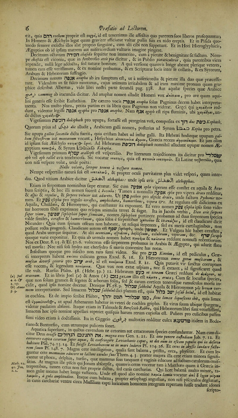 €IA^V. ~-^-- - *-*~*.a lUUpi^LU, /Egyptios ob id ipfum matrem aut mifericordiam vulturis imagine pingere. Decimum oftavum HTDn chaftda fequitur non immerito, cum a pietate &amp; benignitate fit fadfcum. Nem¬ pe chajida efi: ciconia, quae in Ambiofio uvis 'pia dicitur , &amp; in Publio pietaticultrix , quia parentibus vices rependit, nulla lege adducta, fed naturae bonitate. A qua verfione quamvis longe abeant plerique veteres, tamen eam efie verifiimam, &amp; ex nomine probamus, &amp;ex Scripturae locis inter fe collatis, &amp;;ex Syrorum, Arabum &amp;C Hebraeorum fuffragio. Decimum nonum HSJN anapha ab ira fumptum efi:, ut a mifericordia £c pietate illa duo quae praecede- rant. Videndum an fit falco montanus , cujus animum irritabilem &amp; ad iram maxime pronum quam gra¬ phice defcribat Albertus, Vide -libri nofiri parte fecunda pag. 338. Aut aquilas fpecies quae Arabice g-V tsmmag ab iracundia dicitur. Ad anaphas nomen alludit Homeri vox cfooirxtu , pro ave quam aqui¬ lini generis efie Peribit Euftathius. De cetero vocis PI3JK unapha folus Pagninus decem habet interpreta¬ menta. Nos multo plura, petita partim ex iis libris quos Pagninus non viderat. Grqci qui xfydSfM red¬ dunt, videntur legifle HSJK agapha pro HSJN anapha. Nam agaph efi: ripa fluminis, ubi un¬ de drffcus Vigefimum nSOH dukiphatb pro upupa , fortafie efi: peregrina vo*, compofita ex-jH duc D^Kephath. Quorum prius ad dic alludit, Arabicum galli nomen, pofterius ad Syrum Ul*_D Kepha pro petra. Sic upupa gallus faxatilu difta fuerit , quia crifiam habet ad inftar galli. Ita Hebrtei hodieque upupam vaU [um fylvefirem aut montanum vocant, Hefychius dKi*Tfvh« Graecia recens «ymxtxoL. Et jam olim id ipfum fuit ./Efchylo Ad Hebraeum tVSOTi dukiphatb nonnihil alludunt upupm nomen /E- gyptium kxkxQx, cc Syrum Kikupha. r r - Vigefimum primum atallejh eft vefpertilio. Per litmrum trajedionem ita dicitur pro '-hmso yh tdophtallel avis tenebneofa. Sic vocatur quia eft ™„,b, EtLatine vefpertiUo, quia non nili veipere volat, unde poeta: 1 5 1 Node volant, [eroque tenent a vefpere nomen Nempe vefpertilio natura fua eft &amp; propter oculi parvitatem plus videt vefperi, quam inter- diu. Quod vitium Arabice dicitur alchaphas: unde ipfa avis JiUiJl alchopphas. Etiam in ferpentum nominibus fmpe erratur Sic cum npS« ephe viperam efie conflet ex aquila &amp; Ara- bum feripus, &amp; hoc .Hi nomen fecerit , iW.: Tamen a nonnullis npSX ephe pro vipera draco redditur, «* -^7; Ut ifS petbea pro afpide dralo, unde fadum Ppbonts-no- men. Et $&amp;2tfepha pro legulo cerafies, amphisUna, hamorrhous, vipera Crc. At regulum efie didicimus ex Aquila, Chaldaeo, &amp; Hieronymo, qui conftanter ita exponunt. Et vero nomen Jis» tfepha ipfo fono vide¬ tur horrorem fibili exprimere quo rei,qua animalia terret &amp; fugat. Ita in Jacobi verbis , Dan erit ferpen, fuper vtam, SV fephtpbw fuper femttdm, nomen fephiphon pertinere probamus ad duas ferpentum fpecies valde fimiles, ceraflen icbamorrboum, quos Colos e ferpentibus &amp; i, id eft claudicare dicit Nicander: Qu,a cum fmnam offam non habeant ut reliqui ferpentes , fed ex meris cartilaginibus, non poftunt reda progredi. Claudicare autem eft t]5t? faphaph, unde nb'&amp;V. Et Vulgata hic haSet ceraflen quod Arabs uterque fequitur. At alii «cornum, afptdem, bafilifculn, cohtbnm, Neram &amp;c quoque vane exponitur. Et quia ab urendo nomen habet reddunt nonnulli rehntiorum Nos ex Deut.8., (M fod. volucrem efie ferpentem probamus in Arabia Sc AEgypto, qui adurit flato vel morfu: Nec mfi foli hydro aut cherfydro fi mavis convenire has notas ^ .Infe£lum tlu,°?ue Pro ,infe,ao,.non raro r™‘ vide5- Sic pra D’13 Kinrtim, id eft pediculus, Gra> c* ‘nterpretes habent v*,.™ culicum genus Exod. 8. Et Hieronymus omne geni murCarlm \ *™*J??*” F° anr •»*. £ eft -I» Exod. 8. Ii. Quia putavit vh fandus7corruptam efle vocem, &amp; legendum xuupiia. Qute vox non extat ufpiam, nec fi extaret id fivniho^, P 4 ille vult. Rutfus Pfalm. ,8 (Hebt.ju ) .z. Hebneum ^ Et m libris Joel W &amp; Amos ( b ) 013 gazam illis eft *„>*, , eruca; Cum fit locuftL fpecies quae non fo um, gramen &amp; fegetes &amp; arborum folia, fed &amp; earum cortices tenerofque ramufculos moS (*) ^»«Cldlt i fiuod ‘P*° domine docetur. Denique Pf. y8.9. 'fix fiUoW Aquila &amp; Hifonymus NNl. vTr- S’ 9* mem intetpretantui• Sed limacem ^1^32' fabbelulim planum eft, quia y£l' jafab belui id eft habitat in cochlea. Et de impio feribit Pfaltes, -|bn- DDH SlVa® lD3,/«t /,W li^efcem ibit, quia limax eft ©•■, ut apud Athemeum habetur in veteri de cochlea gripho. Et virus fiium ubique fpargens' videtur paulatim abfumi. Itaque etiam mTalmude&amp;^/fft^^, qui Hebraeorum libri funt vewf if mi’ limacem hoc ipfo nomine appellar, repenet quifquis harum rerum curiofus eft. Pulices pro culicibus paffim fumi video etiam a dochfiimis. Ita in Giggeio multoties redditur culex xyanj itidem in Bode- riano &amp; Buxtorfio, cum utrumque pulicem fonet* Cito nc cetorum AUt cctaCeorum fpecies confundantur. Nam cumdi- comererc Lllf ° ^ 7^ ^7 nS; ma^a Ce,e Gen' *• zl- Et c“° t°ert fodiam Job. 7. 12. Et TabZ, pTtT~f%e:pu^T'^^nfnngere Lev.athants caput, u, det eum in efcam populi, ri in deferto rem fuum PrAs Levu“Jt.a”.em M m luderet Pf. 104.16. Et ceto, in abyjfis laudare faBo- ZituTcete Af»7' Aag ce,tc'ntell,S*mus’ q1131'51 funt bala:“, priftis, orca, phyfeter. Et cum le- cantur ut phoca deTohfn A! rw*/w/*Thren. 4.3. prmter majora illa cete etiam minora fignifi- , fitias. At magnus .lle nifcis auiTonim^h?™^ tanc>u''lm e va8,nis edueunt ad fudum catulorum emif-  jm.' terpretibus, tamen cetus non fit ’ Sl,,amvlFetus ™cetur a Matthato quam a Gnecis in- 2-'- men gulae meatus habet longe valfoics''unfAft ^ C,an,arch“s‘ A llCet bal‘cnd mult0 minor> t;l- , i gula amplitudine Itaaul rnm' K ^ ** Suod allor n?mine ‘am,a vocatur A,i i tx,„ in canis caroharnc ventre drea Mfc onH 1 P''°f “ ?8uIlias’ non nifi Pifciculos deglutiac, iviaililiam capti loricatum hominem integrum repertum fuifle tradunt idonei feripto- (a) Joel 4f &amp; 2. ij- \