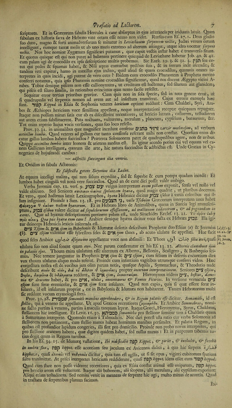 fcriptores. Et in Grxcorum fabulis Hercules a cane abforptus in ejus interaneis per triduum latuit. Quam fabulam ex hiftoria facra de Hebrxo vate ortam efle nemo non videt. Rurfuscum Ef.47. i. Deus gladio fuo duro, magno 6c forti animadverfurum fe minatur in Leviathanem ferpentem veUis•, Judaei verum cetunt intelligunt, eumque tantas molis ut ab uno maris extremo ad alterum attingat, atque ideo vocetur ferpens vellis. Nos hoc nomine Zygaenam fignificari putamus , qux caput vedfcis inftar habet e transverfo fitum. Et quotus quisque eft qui non putet ad balaenam pertinere quicquid de Leviathane habetur Job. 4°* &amp; cum palam agi de crocodilo ex ipla defcriptione multis probemus. Sic Ezek. 29. 3* 8c $z. 3* ^CL1 ccf tus qui pedes &amp; fquamas habet, &amp; Nili aquas conturbat pedibus luis , &amp; in terram inde afcendit, cC tandem reti capitur, hamo in maxillas ejus indito, quid aliud lit quam crocodilus, quamvis omnes in¬ terpretes in quos incidi, agi putent de vero ceto ? Ibidem cum crocodilo Pharaonem a Piopheta mento conferri notamus, quia ipfo Pharaonis nomine crocodilus fignificatur, quod nos docent yEgypto vicini A- rabes. Tobix denique pileem non efle callionymum, ut creditum eft hactenus, fed lilurum aut glanidem, qui pileis ell liluro fimilis, iis rationibus evincimus quas nemo facile refellet. Sequitur error tertius prioribus gravior. Cum quis non in fola fpecie, fed in toto genere errat, ut fi quadrupedis vel ferpentis nomen ad avem aut ad infedtum transferat. Cujus ei 101 is exempla hxc funt. T)3p Kippod in Effla &amp; Sophonia veteres hericium optime reddunt: Cum Chaldaei, Syri, Ara¬ bes &amp;C jEthiopes hericium voce fimillima appellent, neque interpretationi receptx quicquam repugnet. Itaque non polfum mirari fatis cur ab ea dilceflerint recentiores, ut hericio lutram , cariorem, teftudineni aut avem etiam fubllituerent. Puta nodtuam, vulturem, merulam, plancum, cypleium , butaurum, &amp;c. Tot enim reperio hujus vocis verliones, quas fuo loco refello. Prov. 30. 31. in animalibus quae magnifice incedunt cenfetur D’JrlD sariar mothnajim, ad verbum accinUvu lumbis. Quod veteres ad gallum cur tanto confenfu referant mihi non conflat. Quorlum enim di¬ catur gallus lumbos habere liiccindlos ? Praeterea Solomonem patet de quadrupedibus agere, non de avibus. Quippe accinttm lumbis inter leonem 8c arietem medius eft. Iis igitur accedo potius qui vel equum vel ca¬ nem Gallicum intelligunt, quorum ille arte, hic natura fuccindtus adftridtus eft. Unde Gratius in Cy~ negetico de hujuimodi canibus : — adjlricli faccingant ilia 'ventris. Et Ovidius in fabula Adtxonis: Et fubfiriBa gerens Sicyonius ilia Ladon. At equum intelligi malim, qui non folum expedite, fed &amp; fuperbe &amp; cum pompa quadam incedit: Et lumbos habet cingula vel zona vere fuccindtos. Quod an de cane dici poffit valde ambigo. Verba Jeremix cap. 12. verf. 9. vulgus interpretum avempittam exponit, fenfu^vel nullo vel Valde obfcuro. Sed Seniores <rsr>jAouov viativtjs fpeluncam hyxna^ quod magis quadrat , ut pluri cus docemus. Et vero, quod hadtenus latuit Lexicographos, hy&amp;na Hebraice dicitur tfeboa a variis coloribus qui il¬ lam infigniunt. Proinde 1 Sam. 13. 18. pro j vade Tfeboim Graecorum interpretum unus habet Q&amp;potyyec t? valvtuv vallem hj an arum. Et in Hebrxo libro de Animalibus, quem in Suecia Egi manmcii- ptum, tfeboa valere dicitur ad fepulchrorum ejfoffionem, ad trailionem cadaverum , &amp; ad pugnandum in canes. Qux ad hyaenae deferiptionem pertinere palam eft, unde Sirachidcs Ecclef. 13* 2,1. Tu eipyvy vaifi urpo? jcvv# j Qua pax hyana cum cane 'i Arabice denique hyaena dicitur voce fa6ta ex Hebraea Illa igi¬ tur deinceps Hebraicis lexicis inferenda eft. Tfijim &amp; ijim in Babylonis &amp; Idumaeae defertis deferibunt Prophetae duoEfaias (a) &amp; Jeremias {h). tfijim videntur efle fylveftres feles &amp; lfm thoes, ab acuto ululatu fic appellati. Huc facit «.«.te* quod feles Arabice dfajawino appellantur voce non abfimili: Et Thoes Lfj\ 0Q4 filia sw^quafi (b)jerem♦ ululatu fuo non aliud fonent quam awi. Nec parum confirmatur ex his Ef 13. 22. Alternis clamabunt ijim * in palatiis ejus. Thoum enim ululatum efle alternum ex Alberto, Bellonio, Scaligero , &amp; Busbcquio ici¬ mus. Nec temere junguntur in Prophetis ijim &amp; 0»2£ tfijim, cum felium in defertis coeuntium dira vox thoum ululatus aliquo modo referat. Proinde cum infantium vagitibus utrumque conferri video. Haec conjedtura noftra eft de vocibus jam olim parum notis, quafque Aquila , Symmachus, &amp; Theodotio nude deferibunt eziuv &amp; «’«v, Stcc to Aov $ igjuyvdtxs} propter incertam interpretationem. Seniores tfjim^ S-ypia, $ cupivit* &amp; ivSdhpart* reddunt, ijim^ ovokzv retvpvf. Hieronymus itidem befiias, daemo¬ nia &amp; dracones habet, &amp; pro , ululas, onocentauros O Faunos Ficarios. In verfione vernacula tfijim funt ferx eremicolx, &amp; ijim ferx infulares. Quod non capio, quia fi qux eflent ferx in- fulares, id eft infularum proprix , ex in Babylonia &amp; Idumxa non habitarent. Tamen Hebrxorum multi fic reddunt vocum etymologia freti. Prov. 30. 28. femamith manibus apprehendere, &amp; in Regum palatiis elje dicitur. Semamilh, id eft fiellio1 'qui a veneno fic appellatur. Ut apud Grxcos recentiores QuuiotpivEt Arabice Sammabras, nomi¬ ne facto partim a veneno, partim a maculis tanquam leprx. Itaque Grxci, Hieronymus, Syrus, Chaldxus, ftellionem hic intelligunt. Et Levit. 11. 30. femamith a pro ftellione fumitur tam a Chaldxis quam a Samaritano interprete. Quomodo etiam a Talmudicis. Nec dari poteft ulla ratio cur verba Solomonis ad ftellionem non pertineant, cum ftellio manus habeat hominum manibus perfimiles. Et palatia Regum, in quibus eft profundior lapidum congeries, illi fint pro domicilio. Proinde non probo novos interpretes, qui pro ftellione araneam habent, qux digitos quidem habet, fed nullas manus : Et in pauperum tabernis tu¬ tius degit quam in Regum turribus. In his Ef. 34. 15. de Idumxq vaftatione, Ibi nidificabit P)£p) Kippoz, Cr pariet, &amp; excludet, fovebit in umbra fua, JlJjp kippoz. efle acontiam feu jaculum ex Avicenna didici, a quo hic ferpens iQAifi kippha^a^ quafi cthrutos vel dicitur, quia tam eft agilis, ut fi fit opus , viginti cubitorum fpatiuni faltu tranfmittat. At prifei interpretes hericium reddiderant, cuafi JISp kippoz. idem eflet cum T3p kippod. Quod cum ftare non pofte viderent recentiores, quia ex Effla conflat animal efle oviparum, kippoz. pro hericio avem efle voluerunt. Itaque alii bubonem, alii fcopem, alii merulam, alii cypfelumexponunt: Aliqui etiam teftudinem. Sed nemini venit in mentem de ferpente hic agi, multo minus dc acontia. Quod in tractatu de ferpentibus planum facimus.