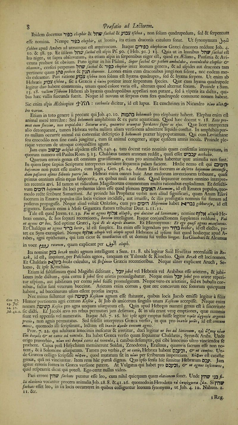 Cen 33. ,9* J°f' a 4- 3 7. Job. 42. u. 8 *Pr#fdtio ad Lectorem. Ibidem docemus yb5 chephir St fachal StTlSV tfeboa , non folum quadrupedum, fed St ferpentum die nomina. Nempe y&amp;3 chephir, ut leonis, ita etiam draconis catulum fonat. Ut fynonymum fablon apud Arabes ad utrumque eft aequivocum. Itaque DH’£D chephirim Graeci dracones reddunt Job. 4. '10. St 28. 39. Et iifdem bW fachal eil afpis Pf. 90. ( Heb. 91.) 13. Quia ut in leonibus fachal eft leo ni er, ut fupra obfervatum, ita etiam afpis in ferpentibus niger eft, quod exiEliano, Paufania St Avi- cenna probare fit obvium. Puto igitur in his Pfalmi, Super fachal Cr pethen ambulabit, conculcabis chephir Ce thanntn, cenfcri perperam bPV fachal St chephir inter leonum genera, St ad afpides aut dracones tam pertinere quam [P&amp;pethen St pfl thanmn. Leones enim cum draconibus jungi non folent, nec eodem mo¬ do calcantur. Pari ratione tfeboa non folum eft hyaena quadrupes, fed St hyaena ferpens. Ut enim ab Hebraeis jfDV tfeboa , fic a Graecis n Mti ponitur inter ferpentum fpecies. Quae cum hyaena quadrupede legitur duo habere communia, unum quod colore varia eft, alterum quod alternat fexum. Proinde 1 Sam. 1^18. vallem Tfeboim Hebraei ab hyaenis quadrupedibus appellari non putant, fed a viperis ita didis, qui¬ bus htec vallis fcecunda fuerit. Neque id novum ut ferpens cum fera quadrupede commune nomen habeat. Sic enim afpis Jtthiopice : tachuola dicitur, id eft lupus. Et cenchrines in Nicandro K{uv x\ leo varius. _ Etiam in toto genere ii peccant qui Job. 40. io. ftlbfO behemoth pro elephante habent. Elephas enim eft animal mere terreftre: Sed behemoth amphibium St ex parte aquaticum. Quod haec docent v. 18. Eccepre¬ mat eum fluvius, non trepidabit: Securus erit, quamvis erumpat Jordanes fuper os ejus. Quae licet interpretes alio detorqueant, tamen Hebraea verba nullam aliam verfionem admittere liquido conftat. In amphibiis por¬ ro nullum occurrit animal cui conveniat deferiptio § behemoth praeter hippopotamum. Qui cumLeviathane feu crocodilo non fine caufa jungitur, cum fit animal congener, atque ejufdem amnis incola. Proinde ple- rique veterum de utroque conjundim agunt. Jam cum 31J40.P achfub afpidem eflePf. 140.4. tam doceat ratio nominis quam confenfus interpretum, in quorum numero eft PaulusRom. 3.13. Chaldaeus tamen araneam reddit, quali eflet Wty acchabis. Quartum erroris genus eft omnium gravilfimum , cum pro animalibus habentur quae animalia noii funt. In quem faepe faepius Scripturae interpretes incidere fequentia palam facient. Hodie nemo eft qui 0*D71 hajemim non putet elfe mulos, cum legit, Gen. 36. 24. Anam Elavi locerum in deferto hajemim inveniffe, dum pafceret aflnos Silonis patris fui. Hebraei enim omnes huic Anae mulorum inventionem tribuunt, quali primus omnium almis equas fubjecerit, ex quibus muli nati lint. Quod fequuntur omnes omnino interpre¬ tes recentis aevi. Id tamen ut ridiculum Magiftrorum commentum multis rationibus explodimus. Et defedi- vum D’D*n hajemim ibi loci probamus idem elfe quod plenum Haemim, id eft Emaeos populos, quo¬ modo rede feribunt Samaritani. Ac proinde his Prophetae verbis non aliud fignificari, quam Anam Efavi locerum in Emaeos populos illis locis vicinos incidilfe, aut irruifle, St illis profligatis nominis fui famam ad pofteros propagalfe. Neque aliud voluit Onkelos, cum pro Q*D’n Hajemim habet gibbaraja, id eft gigantes. Emaeis enim a Mofe Gigantaea ftatura tribuitur Deut. 2.11.12. Tale eft quod Jerem.-i 1.19. Fm ut agnus alluph, qui ducitur ad lanienam •, nomine alluph He¬ braei omnes, St hos fequuti recentiores, bovem intelligunt. Itaque conjundionem fupplentes reddunt. Fui ut agnus Cr bos. Sed optime Graeci, tyd Si ds oigviov ukxkov. Et Hieronymus: Et ego quaji agnus manfuetus. Et Chaldqus ut agnus yy$ berir, id eft fimplex. Ita enim elfe legendum pro TFD bechir, id eft eledo, pa¬ tet ex Syro exemplari. Nempe alluph vel aluph apud Hebraeos id ipfum fuit quod hodieque apud A- rabes, agni epithetum, qui tam cicur St manfuetus eft ut domini fui veftes lingat. Ita Giauhari St Alcamus , quam explicant per aluph. rawum. m voce j Ita nomine pD bemek multi agnum intelligunt 1 Sam. 11. 8. ubi legitur Saiil Ifraelitas recenfuifle in Fe- z.ek, id eft, inquiunt, per Pafchales agnos, tanquam ex Talmude St Kimchio. Quin FeEek eft loci nomen. Et Chaldaeis btzka calculus, ut /3iGraecis recentioribus. Neque aliter explicant Aruch, Se- lomo, St ipfe Kimchius. Etiam id falfiflimum quod Magiftri diditant, V jobel vel Hebraeis vel Arabibus dfe arietem, St jubi¬ laeum inde didum, quia cornu % jobel flve arietis promulgabatur. Neque enim jobel pro ariete reperi- tur ufpiam, aut jubilaeum per cornu jobel fuifle promulgatum. Neque vero ex arietinis, fed ex bubulis cor¬ nibus , fadae funt veterum buccinae. Arietum enim cornua , quae nec concavum nec fonorum quicquam habent, ad buccinarum ufum eflent prorfus inepta. Nec minus falluntur qui pWWp Kefltam agnam efle ftatuunt, quibus locis Jacob emifle legitur a filiis Hemor portionem agri centum Kefltis , St Job ab amicorum fingulis unam Kejitam accepifle. Neque enim nomen Keflu pro agna unquam ufurpatum eft. Quin apud Hebrqos nummi genus eft a finceritate fic didi. Et Jacob i aevo res rebus permutari jam defierant, St in ufu erant verq emptiones, quae nummis fiunt vel appenfis vel numeratis. Itaque Ad. 7. 16. hic ipfe ager emptus fuifle legitur rtfiijs argenti pretio, non agnis permutatus. Sed fefellit interpretes Graeca verfio, in qua pro £x#tov pruv, id eft centum minis, quomodo illi fcripferant, ledum eft wxiqv oi/avdv centum agnis. Prov. 7. 22. qui adulterae lenociniis inefeatur St irretitur, duci legitur ut bos ad lanienam, kvuo 'Gn Sicfxig ce ut canis ad vincula. Ita habet Graeca verfio quam fequuntur Chaldaeus, Syrus St Arabs. Linde origo proverbio, avesv ini Sia-fxx canis ad vincula, a canibusdefumpto,qui cibi lenocinio ultro vinciendos fe praebent. Cujus poft Hefychium meminerunt Suidas, Zenodotus, Erafmus, quamvis facrum efle non no¬ tent, St a Solomone ufurpatum. Tamen pro verbis,^ ut canis,Hebraea habent DDJOl* ^ ut c°mpes. Lin¬ de Graecos colligo fcripfilfe , quod mutatum fit in uvuv per feribarum imperitiam. Kv$av eft cataftae genus, qua rei vinciuntur. Item reus hac poena dignus. Quo ipfo fenfu hic fumitur Hebraeum DDJf. Jam igitur erroris fontes in Graeca verfione patent. At Vulgatus qui habet pro DDJOl? &amp; ut a&amp;ms lafciviens, quid refpexerit dicat qui poteft. Ego certe nullus video. Pari errore fachats putatur efle leo, cum nihil quicquam quam elationem fonet. Unde ln elationis vocantur procera animalia Job. 28.8. 8^41.16. quomodo in Herodoto ix ijux. Si^HBf fachats eflet leo, in iis locis occurreret in quibus colliguntur leonum fynonyma, ut [ob. 4. 10. Nahurm 2. 11. Stc. 1 Reg, X