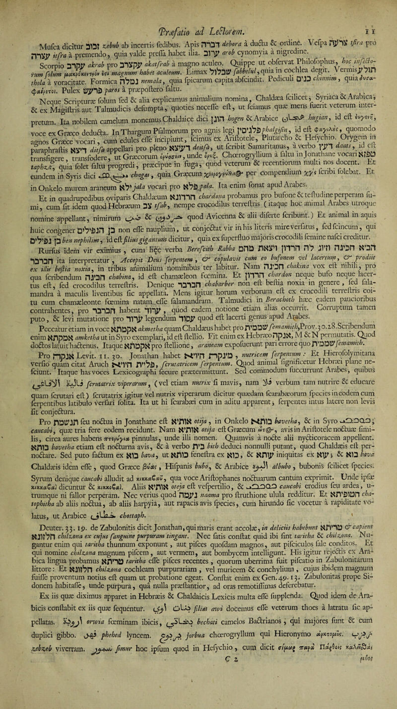 Mufca dicitur 3DT nebub ab incertis fedibus. Apis iTlD1! debora a ductu Sc ordine. Vefpa tjira pro itfra a premendo, quia valde preffa habet ilia. 3V1P cynomyia a nigredine. Scorpio 31pr akrab pro DIVRP akatfrab a magno aculeo. Quippe ut obfervat Philofophus, hoc rum Colum uaxpQxevTfov £?i magnum, habet aculeum. Limax PV7D52J fabbelul, qma m cochlea degit.^ VeimisJ/Pin thola a voracitate. Formica h^Dl ttemala, quia fpicarum capita abfcindit. Pediculi D’J3 chmmm, quia<L™- (pa/feroi. Pulex * praepoftero faltu. _ ... . Neaue Scripturae folum fed Sc alia explicamus animalium nomina, Chaldaea fcihcet, Syriaca &amp; Arabica, &amp; ex Magiftris aut Talmudicis defumpta, quoties necefle eft:, ut friamus quas mens fuerit veterum inter¬ pretum. Ita nobilem camelum monemus Chaldaice dici plH hogen &amp; Arabice hugian, id eft , voce ex Graeco deduda. In Thargum Pfalmorum pro agnis legi po 'pbphalgifn id eft ,, quomodo agnos Graece vocari, cum edules efle incipiunt, Icimus ex Anftotele, Plutarcho &amp; Hefychio Orygem m mraohraftis ditCa appellari pro pleno «2^1 deitfa, ut fcnbit Samaritanus, a verbo pjn daats, id eft transfigere transfodere, ut Graecorum iofvpseip , unde opvf. Chcerogryllium a faltu injonathane vocariNfiDp taphz.fr, quia folet faltu progredi, praecipue in fuga, quod veterum &amp; reeentiorum multi nos docent. Et eundem in Syris dici chagas, quia Grascum £o<poypv»u©-* per compendium xy$ [cn]yi lolebat. Lt in Onkelo murem araneum jala vocari pro vh&amp; jda. Ita enim fonat apud Arabes. Et in quadrupedibus oviparis Chaldaeum chartaria probamus pro bufone Sc teftudine perperam fu¬ mi, cum fit idem quodHebneum Di* tfab, nempe crocodilus terreftns (itaque hoc animal Arabes utroque nomine appellant, nimirum ^ quod Avicenna &amp; alii diferte feribunt.) Et animal in aquis huic congener JD non efle nauplium, ut conjedat vir in his literis mire veritus, fedfcincum , qui atybl p2ben nephilim, id filius gigan tum dicitur, quia ex fuperflUo majoiis crocodili femine nafei ci editui. Rurftis idem vir eximius , cum K<^c verba Berefcith Rabba OHD jWin fQ aVil ^ DP! ‘DIDII ita interpretatur , ^Accepit Deus ferpentem , &amp; copulavit cum eo bufonem vel lacertum, prodiit ex illis beflia noxia, in tribus animalium nominibus ter labitur. Nam PUDIl chahna vox eft nihili, pio qua feribendum rUDH chabina, id eft chamaeleon foemina. Et {ITT! chardon neque bufo neque lacer¬ tus eft, fed crocodilus terreftris. Denique DlDn chabarber non eft beftia noxia in genere, led lala- mandra a maculis liventibus fic appellata. Mens igitur horum verborum eft ex crocodili teueitris coi¬ tu cum chamaeleonte fcemina natam, efle fala mandram. Talmudici in Berachoth haec eadem paucionbus contrahentes, pro 13*1311 habent 1)1^ , quod eadem notione etiam alias occurrit. Corruptum tamen puto, Sc levi mutatione pro legendum quod eft lacerti genus apud Arabes. Peccatur etiam in voce akmetha quam Chaldaeus habet pro JYDD^ femamithfdi ov. 3 0.28. Sci ibendum enim tfjlpDK amketha ut in Syro exemplari, id eft ftellio. Fit enim ex Hebraeo Hp 35*5, M &amp; N per mutatis. Quod clodos latuit hadenus. Itaque pro ftellione, araneam expofuerunt pari errore quo JVDD5?femamith. Pro JnpJ^ Levit. 11.30. Jonathan habet npTD ? nutricem ferpentum : Et Hieiqlblymitana verfio quam citat Aruch ferutatricem ferpentum. Quod animal fignificetui Hebiaei plane ne- fciunt. Itaque has voces L.exicogvaphi fecure praetermittunt. Sed commodum luccutiunt Aiabes, quibus Li ferutatrix viperarum, (vel etiam nutrix fi mavis, nam fi verbum tam nutrire &amp; educare quam fcruta.ri eft) ferutatrix igitur vel nutrix viperarum dicitur quaedam fcarabaeorum fpecies in eodem cum ferpentibus latibulo verfari folita. Ita ut hi fcarabaei cum in aditu apparent * ferpentes intus latere non levis iit conjedura. Pro rVD^in feu nodua in Jonathane eft otija , in Onkelo bavetha, 3c in Syro uD.3Q.D f caucabiy qux tria fere eodem recidunt. Nam K711K otija eft Graecum «t^*, avis in Ariftotele noduas fimi- lis, circa aures habens mip\iytot pinnulas, unde illi nomen. Quamvis a node alii nydicoracem appellent. bavetha etiam eft nodurna avis, &amp; a verbo fl’3 bith deduci nonnulli putant, quod Chaldaeis eft per- liodare. Sed puto fadum ex ^13 bava, ut KJ113 feneftra ex X13, &amp; «mp iniquitas ex &amp; N13 bava Chaldaeis idem efle , quod Graece /3vas, Hifpanis bubo, &amp; Arabice albubo , bubonis fcilicet fpecies. Syrum denique caucabi alludit ad kikxxCocv, qua voce Ariftophanes noduarum cantum exprimit. Unde lpftc mxkuGoc) dicuntur &amp; nnatoGot). Aliis oteja eft vefpertilio, &amp; caucabi erodius feu ardea, u- trumque ni fallor perperam. Nec verius quod riD.PI naama pro ftruthione ulula redditur. Et ^n^lDPI cha- tophitha ab aliis nodua, ab aliis harpyia, aut rapacis avis fpecies, cum hirundo fic vocetur a rapiditate vo¬ latus, ut Arabice chottaph. Deuter. 33.19. de Zabulonitis dicit Jonathan, qui maris erant accolte, in delicus habebunt &amp; capiem chilzona ex cujus [anguine purpuram tingant. Nec fatis conftat quid ibi fint taritha &amp; chilsLona. Nu¬ gantur enim qui taritha thunnum exponunt, aut pifces quofdam magnos, aut pifciculos fale conditos. Et qui nomine chilz.ona magnum pifcem , aut vermem, aut bombycem intelligunt. His igitur rejedis ex Ara¬ bica lingua probamus NflHD taritha efle pifces recentes , quorum uberrima fuit pifcatio in Zabulonitarum littore: Et chiUona cochleam purpurariam , vel muricem Sc conchylium , cujus ibidem magnum fuifle proventum notius eft quam ut probatione egeat. Conftat enim exGen.49.13. Zabulonitas prope Si¬ donem habitafle, unde purpura, qua nulla prasftantior, ad oras remotiflimas deferebatur. Ex iis qute diximus apparet in Hebrads Sc Chaldaicis Lexicis multa efle fupplenda; Quod idem de Ara¬ bicis conflabit ex iis qute fequentur. filias awi docemus efle veterum thoes a latratu fic ap¬ pellatas. orwia focminam ibicis, bechati camelos Badrianos, qui majores funt Sc cum duplici gibbo. phehed lyncem, jorbua choerogryllum qui Hieronymo dfxtopvg. zebzeb viverram. Jj-***> fimur hoc ipfum quod in Hefychio, cum dicit cifuf crccpx Ua^ais C z ptet