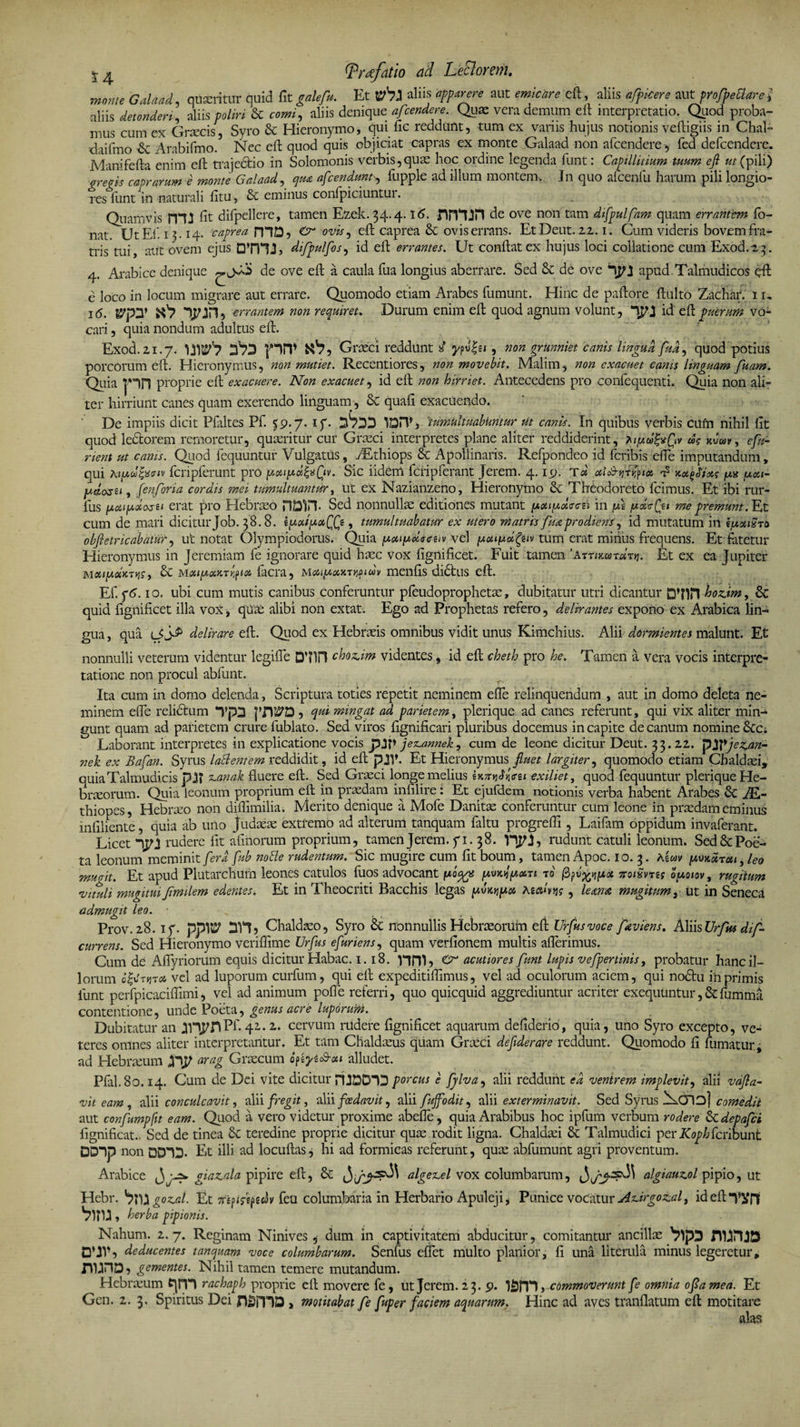 monte Galaad, quaeritur quid fit galefu. Et w'?) aliis apparere aut emicare eft, aliis afficere aut profpeElare l aliis detonderi, aliis poliri &amp; comi, aliis denique afcendere. Quae vera demum eft interpretatio. Quod proba¬ mus cum ex Graecis, Syro &amp; Hieronymo, qui ftc reddunt, tum ex variis hujus notionis veftigiis in Chal- •daifmo &amp; Arabifmo. Nec eft quod quis objiciat capras ex monte Galaad non afcendere, fed defcendere. Manifefta enim eft trajedtio in Solomonis verbis,quae hoc ordine legenda funt: Capillitium tuum eft ut (pili) •precis caprarum e monte Galaad, qua afcendmt, fupple ad illum montem. Jn quo afcenfu harum pili longio¬ res funt in naturali fitu, &amp; eminus confpiciuntur. Quamvis JTU fit difpellere, tamen Ezek. 34.4.16. nrVjJft de ove non tam dtfpulfnm quam errantem fo- nat. Ut Ef. 13.14- caprea niDy Cr ovis, eft caprea &amp; ovis errans. EtDeut. 22. 1. Cum videris bovem fra¬ tris tui, aiit ovem ejus difpulfos, id eft errantes. Ut conftatex hujus loci collatione cum Exod.23. 4. Arabice denique ^ de ove eft a caula fua longius aberrare. Sed &amp; de ove apud Talmudicos eft e loco in locum migrare aut errare. Quomodo etiam Arabes fumunt. Hinc de paftore ftulto Zachar. 1 r, i(5. &amp;’py N'? ATJH ? errantem non requiret. Durum enim eft quod agnum volunt, ‘TJfJ id eft puerum vo¬ cari , quia nondum adultus eft. Exod. 2,1.7. prp Graeci reddunt i ypv|e< , non grunniet canis lingua, fua, quod potius porcorum eft. Hieronymus, non mutiet. Recentiores, non movebit. Malim, non exacuet canis linguam fuam. ■Quia pn proprie eft exacuere. Non exacuet, id eft non hirriet. Antecedens pro confequenti. Quia non ali¬ ter hirriunt canes quam exerendo linguam, &amp; quafi exacuendo. De impiis dicit Pfaltes Pf. 59-7- if- itumultuabuntur ut canis. In quibus verbis cum nihil fit quod lectorem remoretur, quaeritur cur Graeci interpretes plane aliter reddiderint, iipd&amp;fiv dg kvdv, cfu- rient ut canis. Quod fequuntur Vulgatus, zEthiops 8t Apollinaris. Refpondeo id fcribis efle imputandum, qui hifd&amp;civ fcripferunt pro poupct&amp;Qiv. Sic iidem fcripferant Jerem. 4.19. Ta aiod-^Tr/pu» nx^ixg /jus uai- pstosti, fenforia cordis mei tumultuantur, iit ex Nazianzeno, Hieronymo &amp; Theodoreto fcimus. Et ibi rur- fus yictipolosn erat pro Hebraeo HDin. Sed nonnullae editiones mutant pxipdccn in p\ patefit me premant. Et cum de mari dicitur Job. 38.8. kpxipxffi, tumultuabatur ex utero ni atris fm prodiens, id mutatum in {uuiSto obfl e tricabatur, ut notat Olympiodorus. Quia potipoiacuv vel putpdfyiv tum erat minus frequens. Et fatetur Hieronymus in Jeremiam fe ignorare quid haec vox fignificet. Fuit tamen ‘Armtotoirn. Et ex ea Jupiter &amp; MxipxKTy,pix facra, MoupxuTvifidv menfis didtus eft. Ef. f6.10. ubi cum mutis canibus conferuntur pfeudoprophetae, dubitatur utri dicantur D’Hn hozim, Sc quid fignificet illa vox, quae alibi non extat. Ego ad Prophetas refero, delirantes expono ex Arabica lin¬ gua , qua delirare eft. Quod ex Hebraeis omnibus vidit unus Kimchius. Alii dormientes malunt. Et nonnulli veterum videntur legifie DTFI chozim videntes, id eft cheth pro he. Tamen a vera vocis interpre¬ tatione non procul abfunt. Ita cum in domo delenda, Scriptura toties repetit neminem efle relinquendum , aut in domo deleta ne¬ minem effe relictum *Tp2 jTlS^D , qui mingat ad parietem, plerique ad canes referunt, qui vix aliter min¬ gunt quam ad parietem crure fublato. Sed viros fignificari pluribus docemus in capite decanum nomine &amp;C; Laborant interpretes in explicatione vocis pW jezuwnek, cum de leone dicitur Deut. 33.22. pXpjezan- nek ex Bafan. Syrus lattentem reddidit, id eft pJV. Et Hieronymus fluet largiter, quomodo etiam Chaldaei, quiaTalmudicis pj? sumak fluere eft. Sed Graeci longe melius iy.nviSwu exiliet, quod fequuntur plerique He¬ braeorum. Quia leonum proprium eft in praedam infilire: Et ejufdem notionis verba habent Arabes AE- thiopes, Hebraeo non diffimilia. Merito denique a Mofe Danitae conferuntur cum leone in praedam eminus infiliente, quia ab uno Judaeae extremo ad alterum tanquam faltu progredi, Laifam oppidum invaferant. Licet rudere fit almorum proprium, tamen Jerem. fi. 38. VipJ, rudunt catuli leonum. Sed &amp;; Poe¬ ta leonum meminit fera fub noBe rudentum. Sic mugire cum fit boum, tamen Apoc. 10. 3. Aswv pwoir au, leo mugit. Et apud Plutarchum leones catulos fuos advocant 1*0%* pxnijpccn to (B^v^px TtoiSvng opoiovt rugitum vituli mugituiJimilem edentes. Et in Theocriti Bacchis legas pinui px temtjg, lema mugitum, ut in Seneca admugit leo. • „ , Prov.28. iy. pp)W DH? Chaldaeo, Syro Sc nonnullis Hebraeorum eft Urfusvoce feviens. Aliis Urfus dif- currens. Sed Hieronymo verifiime Urftts e fur iens, quam verfionem multis aflerimus. Cum de AfTyriorum equis dicitur Habac. 1.18. nni5 O* acutiores funt lupis vefpertinis, probatur hanc il¬ lorum q^tyitot> vel ad luporum curfum, qui eft expeditifiimus, vel ad oculorum aciem, qui nodtu ihprimis lunt perfpicacifiimi, vel ad animum pofle referri, quo quicquid aggrediuntur acriter exequtintur,&amp;fumma contentione, unde Poeta, genus acre luporum. Dubitatur an jyipriPf. 42,. 2. cervum rudere fignificet aquarum defiderio, quia, uno Syro excepto, ve¬ teres omnes aliter interpretantur. Et tam Chaldaeus quam Graeci deflderare reddunt. Quomodo fi fumatur, ad Hebraeum arag Graecum optyt&amp;eti alludet. Pfal.8o. 14. Cum de Dei vite dicitur PUDDID porcus e Jjlva, alii reddunt ea ventrem implevit, alii vdfla- vit eam, alii conculcavit, alii fregit, alii foedavit, alii fujfodit, alii exterminavit. Sed Syrus Xoio] comedit aut confumpfit eam. Qiod a vero videtur proxime abefie, quia Arabibus hoc ipfum verbum rodere &amp; depafei lignificat.. Sed de tinea &amp;C teredine proprie dicitur quae rodit ligna. Chaldaei &amp; Talmudici per/G^/Acribunt DDIp non DD^ID. Et illi ad locuftas, hi ad formicas referunt, quae abfumunt agri proventum. Arabice giazala pipire eft, Sc algetLel vox columbarum, algiauzol pipio, ut Hebr. blU goz.c.1. Et feu columbaria in Herbario Apuleji, Punice vocaitur AtUrgotal, id eft TiTl herba pipionis. Nahum. 2.7. Reginam Ninives , dum in captivitatem abducitur, comitantur ancillae >ip3 nunja deducentes tanquam voce columbarum. Senfus effet multo planior, fi una literula minus legeretur, ilUriD, gementes. Nihil tamen temere mutandum. Hebraeum tjrn rachaph proprie eft movere fe , ut Jerem. 23. 9. ISITE commoverunt fe omnia oflamed. Et Gen. 2. 3, Spiritus Dei nSfDQ , motitabat fe fuper faciem aquarum. Hinc ad aves tranflatum eft motitare alas
