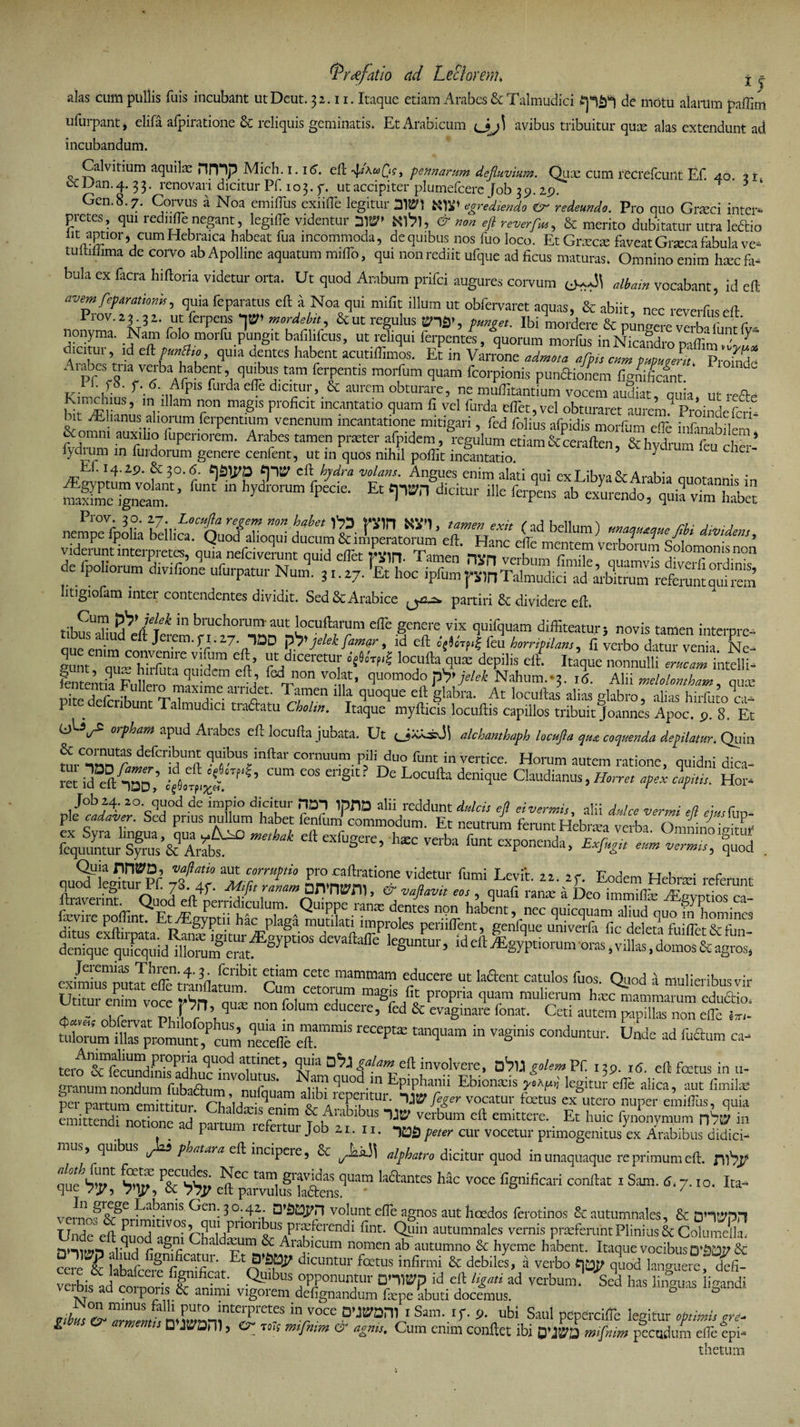 tfr&amp;fatio ad Leclorenu j y alas cum pullis fuis incubant utDeut. 32.11. Itaque etiam Arabes &amp; Talmudici iptfi de motu alarum paffim ufurpant, elifa afpiratione &amp; reliquis geminatis. Et Arabicum <J>j] avibus tribuitur qute alas extendunt ad incubandum. Calvitium aquila niYlp Mich. 1.16. eft > pennarum defluvium. Qux cum recrefeunt Ef. 40. 2 1 ccJJan.4.33. renovari dicitur Pf. 103. y. ut accipiter plumefcere Job 39.29. T 3 Gen.8.7. Comis a Noa emiftus cxiifte legitur SW) KW egrediendo &amp; redeundo. Pro quo Cneci inter¬ pretes, qui rediifoenegant, legifle videntur Kfr), &amp; non eft reverf**, &amp; merito dubitatur utra leftio l!t aptior, cum Hebraica habeat fua incommoda, de quibus nos fuo loco. EtGraec* faveat Graea fabula ve* tuitiliima de corvo ab Apolline aquatum miflo, qui non rediit ufque ad ficus maturas. Omnino enim hsec fa* bula ex facra hifioria videtur orta. Ut quod Arabum prifei augures corvum albam vocabant, id eft avem feparationis, quia feparatus eft a Noa qui mifit illum ut obfervaret aquas, &amp; abiit, nec reverfuseft *rov* 2* ru5 ferPe«s “P &amp; ut regulus an*, punget. Ibi mordere &amp; pungere verbaifintfv' nonyma. Nam folo morfu pungit bafihfcus, ut reliqui ferpentes, quorum morfus inNiranrlmnnir ' y f f q id *{**, «Pia d£«es habent acutiflJos. E? in V« ArabeS tna verba habent, quibus tam ferpentis morfum quam fcorpionis punSionem figni^cfnt. ^ lifS.p. 6. AfpisfurdadTe dicitur, &amp; aurem obturare, ne muffitantium vocem audiat n„ia ut mfte hil *|'US’ ‘V am r°n magls proficit ln“ntatl° quam fi vel furda eflet,vel obturaret aurem? Proinde feri bit lElianus aliorum ferpentium venenum incantatione mitigari, fed folius afpidis morfum efle infinibilem ff™1 .anUph° fi'Penorem- Arabes tamen pneter afoidem, regulum etiam Scceraften, &amp; hydrum' feu cher- lydium in lurdorum genere cenfent, ut m quos nihil poftit incantatio. J e Ef. 14.lp. &amp;30.6. eft hydra volans. Angues enim alati emi uyT iKva AmKIo „„ • . Sr,>o'r' r“ “ fi”'' &amp; i1''' in=* cSrJi, ,„2 amss videiunt interpretes, quia nelciverunt quid efiet Tampn 1 r . monisnon **T litigiofam inter contendentes dividit. Sed &amp; Arabice partiri &amp; dividere eft. eSh FT. 7 qU1-fquam diffiteatur> °vis tamen interpre- gunten™ “SC,! T A’ ^ lo^ufta qui depihs eft{ Itaque &amp; ’ 9 £ hniuta quidem eft, fcd non volat, quomodo p^jelek Nahum.*2. 16. Alii melolomham oux S amdet- Tren illa we eft W-*- At iocuaJ a* 1 . ibunt Talmudici tra&amp;itu Cholm. Itaque myfticis locuftis capillos tribuit Joannes Apoc. p. 8. Et orpham apud Arabes eft locufta jubata. Ut (JXAsJi alchanthaph locufla coquenda depilatur. Quin defcribu“ quibus indar cornuum pili duo funt in vertice. Horum autem ratione, quidni dica¬ ret id SfZll $£#7*’ CUm £0S eng‘ °CUlla d£niqUe Claudianus>®-« ***'*>*■ Hor* Job 2.4. 20. quod de impio dicitur HOT IpOD alii reddunt dulcis efi eivermi,, alii dulce vermi etl ple cadaver. Sed prius nullum habet fenfum commodum. Et neutrum ferunt Hebnea verba Omnino mitui* me,hak eft exfusere’ ^ -ba -p—> **£ s. 'Vfati° my™rru?tio Pr0 caftratione videtur fumi Levit. 22, 2 r. Eodem Hebnei referunt Araverim: ^Ouod eS\lnftv“ pnamprl'm^ > &amp; vaflavit eos, quafi ranas a Deo immiflie rEgyptios ca- fcvire coffint Fr „QUIPPe rmx dentes npn habent, nec quicquam aliud quo in homines exiSutaT eff;tkmmbit cZ rT A0® Ut laftent catulos &amp;os- Ql’°d a mulieribus vir Utitur enim voce fjfl, qUiE K^ educet”^1frPr°P^ qUfm maftam hxc mammarum edudio. ^ 1 r -[-j. \ q lum educeie5 ied &amp; evaginare fonat. Ceu autem papillas non efte e?n- Ullorum ilte pmmunt°,Pcum t3nqUam “ Vaginis Conduntur- Unde ad »m ca^ r^’0<7V 1 eft fams in u- granum nondum fubaftum .nufquam alibi ?eperimr T* ?T ^ ^ ^ T ^ per partum emittii-nr riv.u ' ;'4 a^i lepentur. feger vocatur foetus ex utero nuper emiflus, quia emittendi notione ad partum refertur Tob 211 m ClbUm ^ emittcre'. Et hlllc fynonymxjm m j- Lum lereitui job 21. 11. peter cur vocetur primogenitus ex Arabibus didici- ’ q ^ P^atara eft incipeie, &amp; alphatro dicitur quod in unaquaque re primum eft. ixh)? iue^f eft part7lu?'llaensqUam MC V0Ce COnftat 1 SiUn' 7'IO' Ita vernof ^Cn' ^ °- ^ri v°lnnt efle agnos aut hcedos ferotinos &amp; autumnales, &amp; OHtypn r> i ‘ j. p , °?,qmp,10nbus praferendi fint. Quin autumnales vernis prsefenint Plinius &amp; Columella Vqd°r agc Chald7m &amp; Arabicum nomen ab autumno &amp; hyeme habent. Itaque vSdS&amp; C re &amp; faWcSnt di~fetus &amp; dcbil“> » verbo W q?,od langumefdrf- K i b10ele. figmficat. Quibus opponuntur DHWp id eft ligati ad verbum. Sed has linouis libandi ve.b,s ad corporis &amp; animi vigorem defignandum fepe Sbuti docemus. ° * jr/Jw^77Lf!n,7m-,ftCJP1'eteS mcV°Ce D’JB,ari1 lSam- U- P- ubi Saul pepercifle legitur optimisgre- g ■ msemts B JtPOm, n,s msfmrn cr agnis. Cum enim conflet ibi 0>J(ya mi[nm pecudum efle epi- thetum