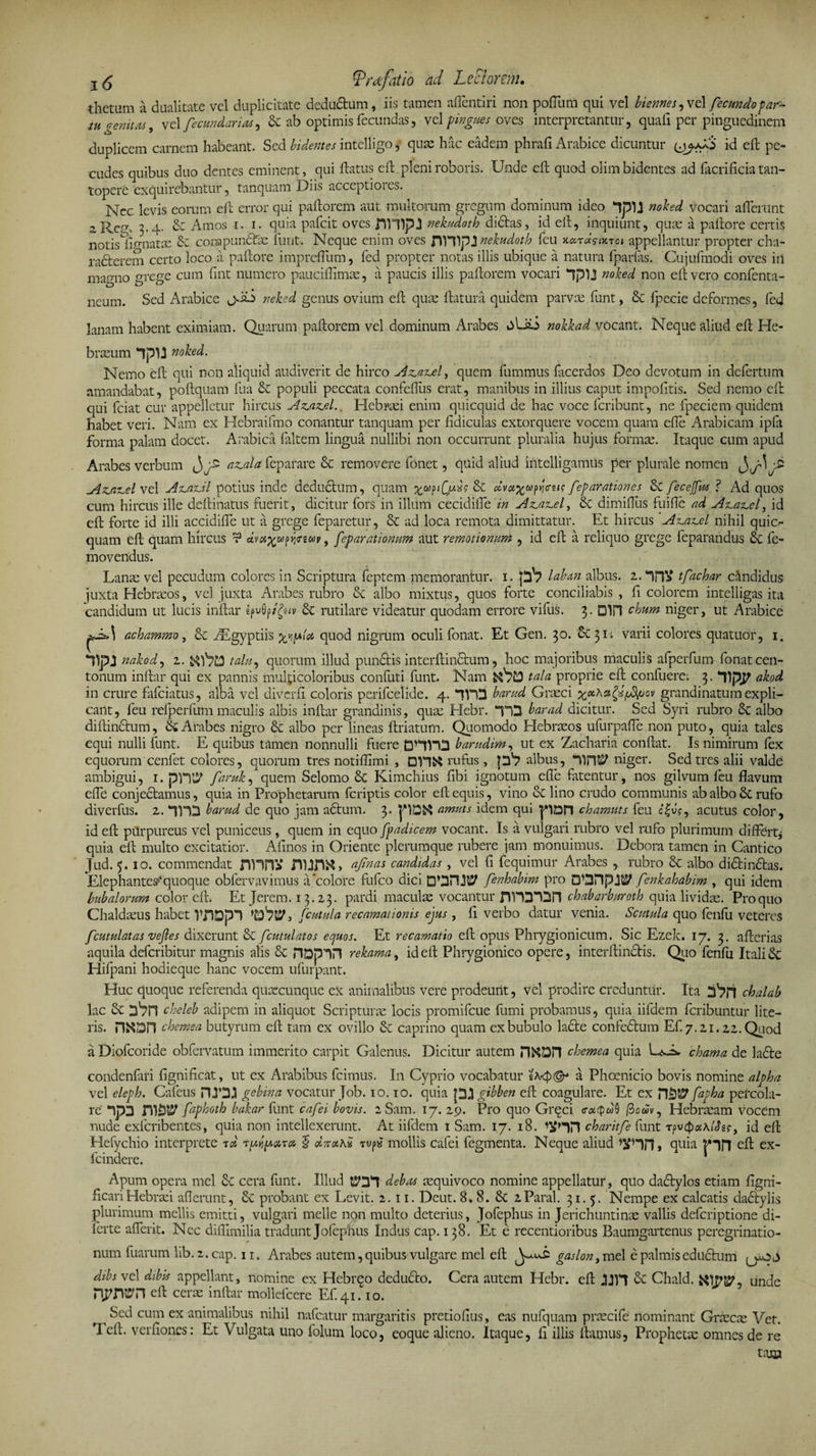 thetum a dualitate vel duplicitate dedudtum, iis tamen aflentiri non polium qui vel hiemes, vel fecundo far¬ tu genu^, vel fecundarias, &amp; ab optimis fecundas, vel pingues oves interpretantur, quali per pinguedinem duplicem carnem habeant. Sed bidentes intelligo, quae hac eadem phrafi Arabice dicuntur yjfrS id eft pe¬ cudes quibus duo dentes eminent, qui flatus eft. pleni roboris. Unde eft quod olim bidentes ad facrificia tan¬ topere exquirebantur, tanquam Diis acceptioies. Nec levis eorum eft error qui pallorem aut multorum gregum dominum ideo 3pU noked vocari afferunt 2 Ren. 3.4. &amp; Amos 1. 1. quia pafeit oves fiHlpJ nekudoth didtas, id eft, inquiunt, quae a pallore certis notis Yumatae &amp; compunctas furit-. Neque enim oves fimpJ nekudoth feu x«t*Vjxtoj appellantur propter cha¬ racterem certo loco a pallore impreflum, fed propter notas illis ubique a natura fparfas. Cujufmodi oves iii magno grege cum fmt numero pauciflimas, a paucis illis pallorem vocari noked non elivero confenta- neum. Sed Arabice j.iG nehed genus ovium eft quae ftatura quidem parvae funt, &amp; fpecie deformes, fed lanam habent eximiam. Quarum pallorem vel dominum Arabes »3Lai nokkad vocant. Neque aliud eft He¬ braeum 3pU noked. Nemo eft qui non aliquid audiverit de hirco Azazel, quem fummus facerdos Deo devotum in defertum amandabat, poftquam fua &amp; populi peccata confeflus erat, manibus in illius caput impolitis. Sed nemo eft qui fciat cur appelletur hircus Az.az.el.. Hebraei enim quicquid de hac voce feribunt, ne fpeciem quidem habet veri. Nam ex Hebraifmo conantur tanquam per fidiculas extorquere vocem quam efle Arabicam ipfi forma palam docet. Arabica faltem lingua nullibi non occurrunt pluralia hujus formae. Itaque cum apud Arabes verbum azala feparare &amp; removere fonet, quid aliud intelligamus per plurale nomen •£ Az.az.el vel Az.az.il potius inde deductum, quam &amp; dvot%upww feparationes &amp; fecejfns f Ad quos cum hircus ille deftinatus fuerit, dicitur fors in illum cecidi!Te in Azazel, &amp; dimiflus fuifle ad Azazel, id eft forte id illi accidiffe ut a grege feparetur, &amp; ad loca remota dimittatur. Et hircus Azazel nihil quic- quam eft quam hircus t? dva%a>piirsay, feparatiomm aut remotionum , id eft a reliquo grege feparandus &amp; fe- movendus. Lanae vel pecudum colores in Scriptura feptem memorantur. 1. pb labein albus. 2. IPlV tfachar candidus juxta Hebraeos, vel juxta Arabes rubro 8c albo mixtus, quos forte conciliabis, fi colorem intelligas ita candidum ut lucis inftar ipvQp/gtiv &amp; rutilare videatur quodam errore vifus. 3. D1H chum niger, ut Arabice achammo, 6c yEgyptiis %viplot> quod nigrum oculi fonat. Et Gen. 30. &amp; 31; varii colores quatuor, 1. Dpi nakod, 2. talu, quorum illud pundlis interftinclum, hoc majoribus maculis afperfum fonat cen¬ tonum inftar qui ex pannis multicoloribus confuti funt. Nam tala proprie eft confuere. 3. TpE akod in crure fafeiatus, alba vel divcrli coloris perifeelide. 4. TVO barttd Graeci grandinatum expli¬ cant, feu refperfum maculis albis inftar grandinis, quae Hebr. TD barad dicitur. Sed Syri rubro albo diftinclum, &amp; Arabes nigro &amp; albo per lineas llriatum. Quomodo Hebraeos ufurpafle non puto, quia tales equi nulli funt. E quibus tamen nonnulli fuere DHVH barudim, ut ex Zacharia conftat. Is nimirum fex equorum cenfet colores, quorum tres notillimi , rufus , p'? albus, niger. Sed tres alii valde ambigui, 1. pnt? famk, quem Selomo Kimchius fibi ignotum efle fatentur, nos gilvum feu flavum eiTe conjedtamus, quia in Prophetarum feriptis color eft equis, vino cC lino crudo communis ab albo rufo diverfus. z. *TnD barud de quo jam adtum. 3. pDtt anmts idem qui pDH chamuts feu c|u?, acutus color, id eft pdrpureus vel puniceus, quem in equo fpadicem vocant. Ts a vulgari rubro vel rufo plurimum differt* quia eft multo excitatior. Afinos in Oriente plerumque rubere jam monuimus. Debora tamen in Cantico Jud.5.10. commendat HlinV flUDi*, afmas candidas , vel fi fequimur Arabes , rubro &amp; albo didtin&amp;as. Elephantes^quoque obfervavimus a‘colore fufeo dici 0*3113^ fenhabim pro □ 'DPplW fenkahabim , qui idem bubalorum color eft. Et Jerem. 13.23. pardi maculas vocantur nn3“13n chabarburoth quia lividas. Pro quo Chaldaeus habet VilDpl fcutula recamationis ejus , 11 verbo datur venia. Scutula quo fenfu veteres fcutulatas vejles dixerunt fcutulatos ecjuos. Et recamatio eft opus Phrygionicum. Sic Ezek. 17. 3. allerias aquila deferibitur magnis alis Se HDpin rekama, id eft Phrygionico opere, interftinclis. Quo fenfu Itali &amp; Hilpani hodieque hanc vocem ufurpant. Huc quoque referenda quaecunque ex animalibus vere prodeunt, vel prodire creduntur. Ita ckalab lac &amp; cheleb adipem in aliquot Scripturae locis promifeue fumi probamus, quia iifdem feribuntur lite¬ ris. n«DH chemea butyrum eft tam ex ovillo &amp; caprino quam ex bubulo lacie confedlum Ef. 7.21.22. Quod a Diofcoride obfervatum immerito carpit Galenus. Dicitur autem n&amp;SH chemea quia UsA* chama de ladle condenfari fignificat, ut ex Arabibus fcimus. In Cyprio vocabatur a Phoenicio bovis nomine alpha vel eleph. Cafeus HJ’33 gebina vocatur Job. 10.10. quia [33 gibben eft coagulare. Et ex fapha percola¬ re' 3p3 mfity faphoth bakar funt cafei bovis. 2 Sam. 17. 2p. Pro quo Grqci <roc<J>w0 fiodiv, Hebrasam vocCm nude exferibentes, quia non intellexerunt. At iifdem 1 Sam. 17. 18. qfHH charitfe funt rpvQotKlJis, id eft Hefychio interprete zd repara, £ oczoiKi Tfpa mollis cafei fegmenta. Neque aliud , quia P3J3 eft ex- fcinaere. Apum opera mei &amp; cera funt. Illud t?31 debas asquivoco nomine appellatur, quo dactylos etiam figrri- ficariHebraei allerunt, Sc probant ex Levit. 2. 11. Deut. 8» 8. &amp; 2Paral. 31.5. Nempe ex calcatis dadlylis plurimum mellis emitti, vulgari meile non multo deterius, jofephus in Jerichuntinas vallis deferiptione di- ferte aflerit. Nec diffimilia tradunt Jofephus Indus cap. 138. Et e recentioribus Baumgartenus peregrinatio¬ num fuarum lib. 2. cap. 11. Arabes autem, quibus vulgare mei eft gaslon, mei e palmis eductum dtbs vel dibis appellant, nomine ex Hebreo dedudlo. Cera autem Hebr. eft 3JH &amp; Chald. unde nynm eft cerae inftar mollefcere Ef.qiTio. Sed cum ex animalibus nihil nafcatur margaritis pretioflus, eas nufquam praecife nominant Grtecm Vet. Teli, vernones: Et Vulgata uno folum loco, eoque alieno. Itaque, li illis liamus, Prophetae omnes de re tam