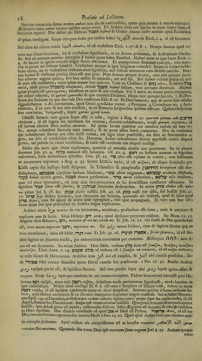 jg (pydfdtk) ad Lectorem. Succino vernaculus Termo nomen ambari non alia de caufa indidit, quam quia putatur a majore ceto ejici. iEthiopicc enim ambar vocatur quilibet major cetus. Ut Arabice certa ceti fpecies in cujus ventre fama eft fuccinum reperiri. Nec defunt qui Hebrxo hafmal &amp; Grxco jjAbtrp* elettri nomine apud Ezekielem id ipfum intelligant. Itaque interpres Arabs pro electro habet alcarabe Ezek. 1.4. id eft fuccinum. Sed idem fui oblitus reddit almaha, id eft cryftallum Ezek. 1.27. 8. 1. Nempe >?A*jcTpov apud ve¬ teres non folum fuccinum, fed cryftallum fignificavit, ut ex Avieno probamus, Sc Ariftophanis fcholia- Ite. Sed ad neutrum pertinet defcriptio § hafmal quam habet Ezechiel. Hafmal enim in igne lucet Ezek. 1. 4. At fuccini in ignemconjedti fulgor ftatim obfcuratur. Et quamprimum flammam concipit, tota mate¬ ries in picem aut relinam lentefcit. Cryftallum quoque in igne fuliginem contrahit. Itaque ut hafmal in He¬ braeo textu, ita in verflonibus eledtrum aliud fignificat, auri fcilicet mixturam cum diverfo metallo. Inte¬ ritu hafmal &amp; electrum prorfus idem efle non puto. Nam proprie dicitur, cum auri quatuor parti¬ bus mileetur argenti quinta, live hxc miftio fit naturalis, aut arte fiat. Sed hafmal videtur potius ex tere &amp; auro efle conflatum, atque ipfum nomen hoc indicare. Cum aes Chaldaice fit OTJ nehas, &amp; aurum V?D melal, unde primo nehafmelal, deinde hafmal fadtum, voce utrinque decurtata. Hafmal igitur proprie eft xa'Ay-0X,?V(l'‘l0f metallum ex auro &amp; tere conflans. Vel fi mavis tes aurum pretio exaequans, aut colore referens, ut ^«Ako? ^puc-oe^V de quo meminit Diodorus. Hujus funt quinque fpecies, i AEsPer- ficum feu Indicum ex quo duo vafa Deo confecrata Efdr. 8.27. Et Darii batiacte, quq ab aureis folo olfactu dignofeebantur. 2 AEs coronarium, quod Grteci %o\oGet<pov vocant. 3 Pyropum. 4 Corinthium aes. 5 Auri¬ chalcum, fi ex auro 5c tere vere conftitit,^ ut ex Romanis feriptoribus quidam afferunt. Quibus Hefychius fere concinens, 'ope^aA*©*, inquit ^«Axo? Obfefla Samaria cum gravis fames eflet in urbe, legitur 2 Reg. 6. ±y. quartam parum cabi chirjonim , id efl logum feu menfuram fex ovorum, ftercoris columbarum, veniffe quinque argenteis, id efl novem circiter libris noftrae monetae. Ad quem locum quaeritur cur menflira tantula rei tam vi¬ lis > nempe columbini ftercoris tanti venerit, Bc in quem ufum fuerit comparata. Nos iis confutatis qui columbarum Aereus pro cibo fuifle volunt, aut ligni vices praeftitifle, aut fimi ad ftercorandos a- gros, aut falis ad condiendos cibos &amp;c. Docemus Arabes columbarum ftercus appellafle ciceris aliquod genus, aut pultem ex cicere confectam, &amp; valde efle verifimile tale aliquid intelligi. Multa alia taceo quae obiter explicamus, quamvis ad animalia directe non pertineant. Ita in plantis docemus Job. 3°- 4- nV?D malluach efle halimum. Of. 10. 4. ros herbam amaram in fegetibus nafcentem, forte malanthium fylveflre. Gen. 38. 25. tferi efle rejinam ut veteres, non balfamum ut recentiores exponunt. 1 Reg. 4. 33. Syram lupha, id eft ocd&amp;ov, al> aliquo femidodto pro zupha feu hyflopo fuifle feriptum. In Valmudicis 6c paraphraftis JUSVTVn hirdophnin efle rho¬ dodaphnen, ifaphfatha herbam Medicam, tjithri origanum, KJTDD.P accobitha fillybum, *7)pp kakuli ciceris genus, rDDH thamca parthenium , meror cichorium, ulfa intubum, qux vel plane ignorantur, vel inter alias interpretationes ab his diverfiffimas cundtanter afferuntur. In lapidibus famir efle fmirin, &amp; JOVlJD fandalchin fardonyches. In armis |VV3 chidon efle 7r*A- rov pilum Jof. 8. 18. &amp;c. ficchot miffilia Job. 40. 26. yOD maffa iter alibi, fed haftile Job. 41. 17. frja ibidem fpiculum, non thoracem aut loricam, quomodo alii reddunt, quafi fit idem quod frjon j cum ibi agatur de armis quae oppugnant , non quae propugnant. Et vero tam hoc ulti¬ mum quam duo quas praecedunt ex Arabica lingua explicamus. Arabice etiam w arat a de via intricatum, occultum, profundum efle fonat , unde fe extricaret explicare non fit facile. Idem Hebrqis DT parat^ quod declinare perperam reddunt. Sic Nurn. 22. 13. Angelus dicit Balaamo, DT, intricata efl via tua coram me. Et Job. 16. i 1. viri fancti de Deo querela haec eft, inter manus impiorum , implicavit me. Sic ranana ftridere, cum de fagittis dicatur quq ex arcu excutiuntur, idem eft Hcbr. PU*! rana. Et Job. 39. 2 6. , fi ridet pharetra, id eft ftri- dent fagittx ex pharetra emiflx, per metonymiam continentis pro contento. AEthiopice f\ATU balas fi¬ cus eft aut fycaminus. Ita etiam Arabice. Hinc Hebr. verbum 0^3 balas eft tfadfyiv, 9-pidfyiv, ipivdgeivt oAvifQtdfav. Unde Amos. 7. 14. D*Dp5^ ?-d verbum eft 0 <tuxApvcs, id eft xvigcov vellicans, ut recte Grxci 5c Hieronymus. Arabibus item ibil eft camelus, 6c a^d camelis prasfedtus: In¬ de 'tDIK Obii vocatur Iftnaelita quem David camelis fuis praefecerat. 1 Par. 27. 30. Rurfus Arabice ratfapha pavire eft, &amp; lapidibus fternere. Sed cum puncto fuper tfad Jydoj lapide ignito affare t coquere. Unde lapis quo candente lac aut carnes excoquunt. Eadem homonymia laborafle puto He¬ braeum ratfaph, atque inde ritfpha, dedudtum modo pavimentum fignificafle , modo lapidem in igne candefactum. Neque aliud intelligo Ef. 6. 6. u6i unus e Seraphim ad Efaiam volat, habens in manu ritfpha, id eft lapidem candentem quem ex altari fumpferat. Seniores quidem dvQpotm carbonem ha¬ bent, quod Hebrqi recentiores &amp; ex illis novi interpretes fequuntur magno confenfu. Sed ut habet Hierony¬ mus Epift. 143. ad Damafum, in Hebrao pro carbone calculus legitur, c diteris quoque fuper hoc confonantibus, id eft Aquila, Symmacho, Theodotione. Itaque ipfe etiam calculum reddidit. Quin putat Seniores idem quod exteros fenfifle, quia av9p«| genus eft lapidis, carbunculus fcilicet. iEgyptiis eft ferpens; &amp;o^«?©-bafilifcus in Horo Apolline. Huc alludere verofimile eft quod DlfrS ob Mofi eft Python. Anel, id eft leo Dei, virorum fortium cognomen fuit in terra Moab 2Sam.23.20. Quod apud Arabes hodieque obtinere mul¬ tis exemplis probamus. Apud eofdem ufu receptiflimum eft ut locuftx vocentur exercitus Vei maximus. Quomodo illas vocat Deus ipfe exercitum fmm magnum Joel i. zp. Arabum quoque « voca-