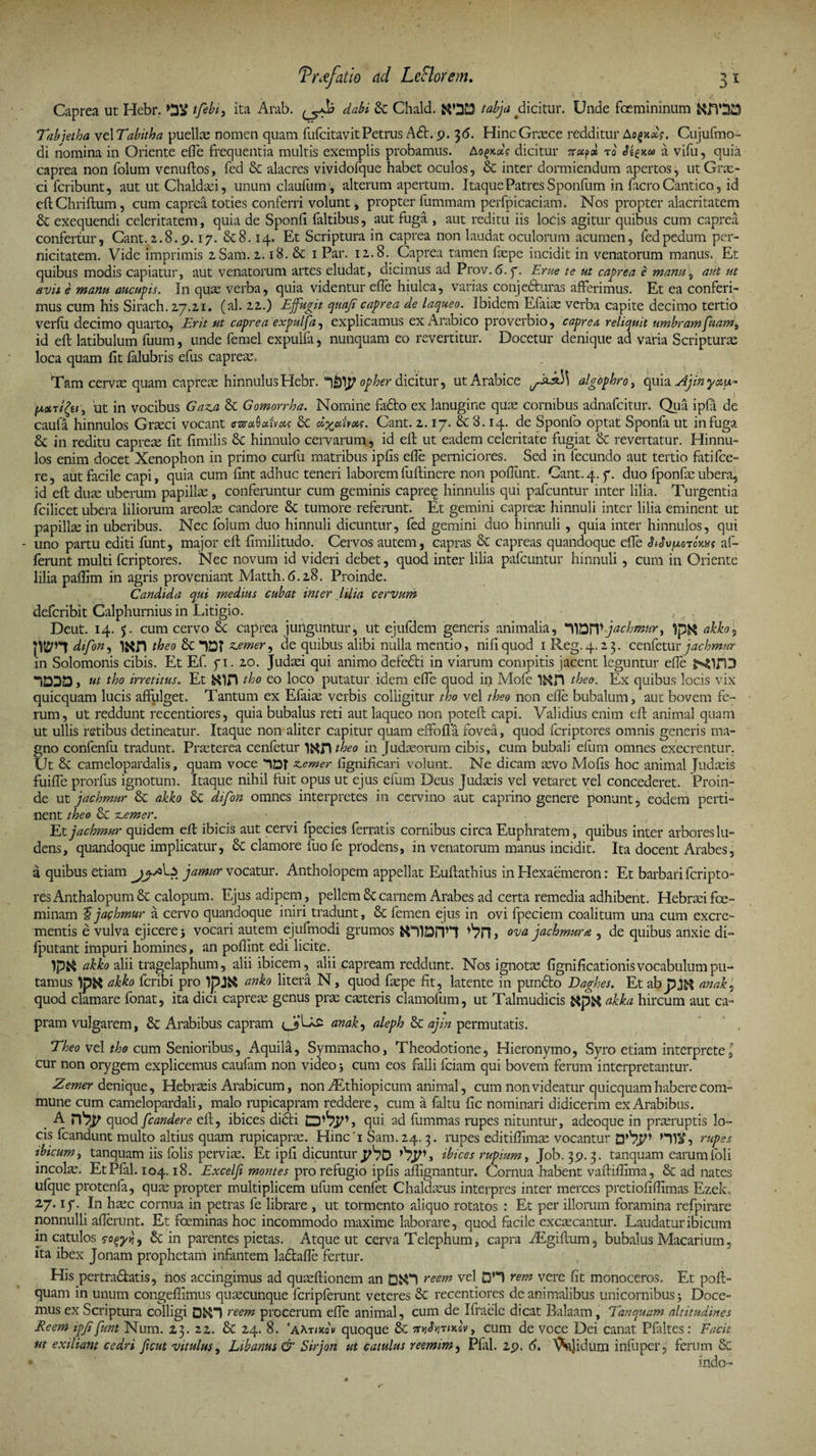 Caprea ut Hebr. tfebi, ita Arab. dabi &amp;: Chald. tabja ^dicitur. Unde foemininum KIV2D Tabietha vc\Tabitha puellae nomen quam fufcitavit Petrus A£h 9. 3 6. Hinc Graece redditur Aogx#?. Cujufmo- di nomina in Oriente efle frequentia multis exemplis probamus. Ao^dg dicitur nuf» ro a vifu, quia caprea non folum venuftos, fed &amp; alacres vividofque habet oculos, 6c inter dormiendum apertos, ut Grae¬ ci fer ibunt, aut ut Chaldaei, unumclaufum, alterum apertum. Itaque Patres Sponfum in facro Cantico, id eftChriftum, cum caprea toties conferri volunt, propter fummam perfpicaciam. Nos propter alacritatem &amp; exequendi celeritatem, quia de Sponfi faltibus, aut fuga , aut reditu iis locis agitur quibus cum caprea confertur, Cant. 2,.8.p. 17. &amp; 8.14. Et Scriptura in caprea non laudat oculorum acumen, fed pedum per¬ nicitatem. Vide imprimis 2.Sam. 2.18. &amp; 1 Par. 12.8. Caprea tamen fepe incidit in venatorum manus. Et quibus modis capiatur, aut venatorum artes eludat, dicimus ad Prov. 6. 7. F.rue te ut caprea e manu5 aut ut avis e manu aucupis. In quas verba, quia videntur efle hiulca, varias conjeduras afferimus. Et ea conferi¬ mus cum his Sirach. 2,7.2.1. (al. 2.2,.) Effugit quaji caprea de laqueo. Ibidem Efiiias verba capite decimo tertio verfii decimo quarto, Erit ut caprea expulfa, explicamus ex Arabico proverbio, caprea, reliquit umbramfuamt id eft latibulum fuum, unde femel expulfa, nunquam eo revertitur. Docetur denique ad varia Scripturas loca quam fit falubris efus capreas. Tam cervae quam capreae hinnulus Hebr. opher dicitur, ut Arabice algophro, quia Ajin yzw* [aotu&amp;i , ut in vocibus Gaza &amp; Gomorrha. Nomine fafto ex lanugine quas comibus adnafeitur. Qua ipfa de caufa hinnulos Graeci vocant ffzraQaivat £c ci%ctivotg. Cant. 2.17. &amp; 8.14. de Sponlo optat Sponfa ut in fuga in reditu capreae fit limilis &amp; hinnulo cervarum, id efb ut eadem celeritate fugiat &amp; revertatur. Hinnu¬ los enim docet Xenophon in primo curfu matribus ipfis efle perniciores. Sed in fecundo aut tertio fatifee- re, aut facile capi, quia cum fint adhuc teneri laborem fuftinere non poflunt. Cant.4.7. duo fponfas ubera, id efl duae uberum papillae , conferuntur cum geminis capreq hinnulis qui pafcuntur inter lilia. Turgentia fcilicet ubera liliorum areolae candore 8c tumore referunt. Et gemini capreae hinnuli inter lilia eminent ut papillae in uberibus. Nec folum duo hinnuli dicuntur, fed gemini duo hinnuli, quia inter hinnulos, qui - uno partu editi funt, major efl: fimilitudo. Cervos autem, capras &amp; capreas quandoque efle SkSvuqtgxxs af¬ ferunt multi feriptores. Nec novum id videri debet, quod inter lilia pafcuntur hinnuli , cum in Oriente lilia paffim in agris proveniant Matth. 6.2.8. Proinde. Candida qui medius cubat inter lilia cervum deferibit Calphurnius in Litigio. Deut. 14. 5. cum cervo 8c caprea junguntur, ut ejufdem generis animalia, yfoWjachmur> akko5 difon, theo &amp; 1DT zemer, de quibus alibi nulla mentio, ni fi quod iReg.4.23. cenfetur jachmur in Solomonis cibis. Et Ef. 71. 20. Judaei qui animo defedti in viarum compitis jacent leguntur effe MlfD ‘IDDD, ut tho irretitus. Et tho eo loco putatur idem efle quod in Mofe theo. Ex quibus locis vix quicquam lucis affulget. Tantum ex Efaioe verbis colligitur tho vel theo non efle bubalum, aut bovem fe¬ rum, ut reddunt recentiores, quia bubalus reti aut laqueo non potefl capi. Validius enim efl: animal quam ut ullis retibus detineatur. Itaque non aliter capitur quam effio fla fovea, quod feriptores omnis generis ma¬ gno confenfu tradunt. Praeterea cenfetur lOUTStheo in Judaeorum cibis, cum bubali efum omnes exeerentur. Ut &amp; camelopardalis, quam voce zemer fignificari volunt. Ne dicam aevo Mofis hoc animal Judaeis fuifle prorfus ignotum. Itaque nihil fuit opus ut ejus efum Deus Judaeis vel vetaret vel concederet. Proin¬ de ut jachmur &amp; akko &amp;C difon omnes interpretes in cervino aut caprino genere ponunt, eodem perti¬ nent theo 8c zemer. _ Etjachmur quidem efl ibicis aut cervi fpecies ferratis cornibus circa Euphratem, quibus inter arbores lu¬ dens, quandoque implicatur, &amp; clamore fuo fe prodens, in venatorum manus incidit. Ita docent Arabes, a quibus etiam jamur vocatur. Antholopem appellat Euftathius in Hexaemeron: Et barbari feripto¬ res Anthalopum &amp; calopum. Ejus adipem , pellem 8c carnem Arabes ad certa remedia adhibent. Hebraei fce- minam $ jachmur a cervo quandoque iniri tradunt, &amp; femen ejus in ovi fpeciem coalitum una cum excre¬ mentis e vulva ejicere 5 vocari autem ejufmodi grumos flhlDITt ova jachmur* , de quibus anxie di- fputant impuri homines, an poflint edi licite. akko alii tragelaphum, alii ibicem, alii capream reddunt. Nos ignotae fignificationis vocabulum pu¬ tamus JpK akko feribi pro lpjtf anko litera N, quod foepe fit, latente in pun£to Daghes. Et abpJH anak5 quod clamare fonat, ita dici capreae genus prae casteris clamofum, ut Talmudicis akka hircum aut ca¬ pram vulgarem, &amp; Arabibus capram anak, aleph &amp; ajin permutatis. Theo vel tho cum Senioribus, Aquila, Symmacho, Theodotione, Hieronymo, Syro etiam interpretel cur non orygem explicemus caufam non video j cum eos falli fciam qui bovem ferum interpretantur. Zemer denique, Hebraeis Arabicum, non zEthiopicum animal, cum non videatur quicquam habere com¬ mune cum camelopardali, malo rupicapram reddere, cum a faltu fic nominari didicerim ex Arabibus. A quod [candere efl, ibices di£ti qui ad fummas rupes nituntur, adeoque in praeruptis lo¬ cis fcandunt multo altius quam rupicaprae. Hinc 1 Sam.24. 3. rupes editiflimoe vocantur 0>V7TV HI*, rupes ibicum, tanquam iis folis perviae. Et ipfi dicuntur ibices rupium > Job. 39. 3. tanquam earum foli incola. EtPfal. 104.18. Excelji montes pro refugio ipfis affignantur. Cornua habent vafiiflima, &amp; ad nates ufque protenfa, quae propter multiplicem ufum cenfet Chaldaeus interpres inter merces pretiofiflimas Ezek. 27.17. In haec cornua in petras fe librare , ut tormento aliquo rotatos : Et per illorum foramina refpirare nonnulli afferunt. Et foeminas hoc incommodo maxime laborare, quod facile excoecantur. Laudatur ibicum in catulos 5-0^, 8c in parentes pietas. Atque ut cerva Telephum, capra iEgiflum, bubalus Macarium, ita ibex Jonam prophetam infantem ladlafle fertur. His pertra&amp;atis, nos accingimus ad quoEftionem an DN*l reem vel Q,,eJ rem vere fit monoceros. Et pofl- quam in unum congefiimus quaecunque fcripferunt veteres 8c recentiores de animalibus unicornibus > Doce¬ mus ex Scriptura colligi D&amp;l reem procerum efle animal, cum de Ifraele dicat Balaam , Tanquam altitudines Reem ipjifunt Num. 23. 22. 8c 24. 8. ‘amWv quoque 8c iv.lv, cum de voce Dei canat Pfaltes: Facit ut exiliant cedri ficut vitulus , Libanus &amp; Sirjon ut catulus reemim, Pfal. 29. 6. t^ftjidum infuper, ferum &amp; • indo-