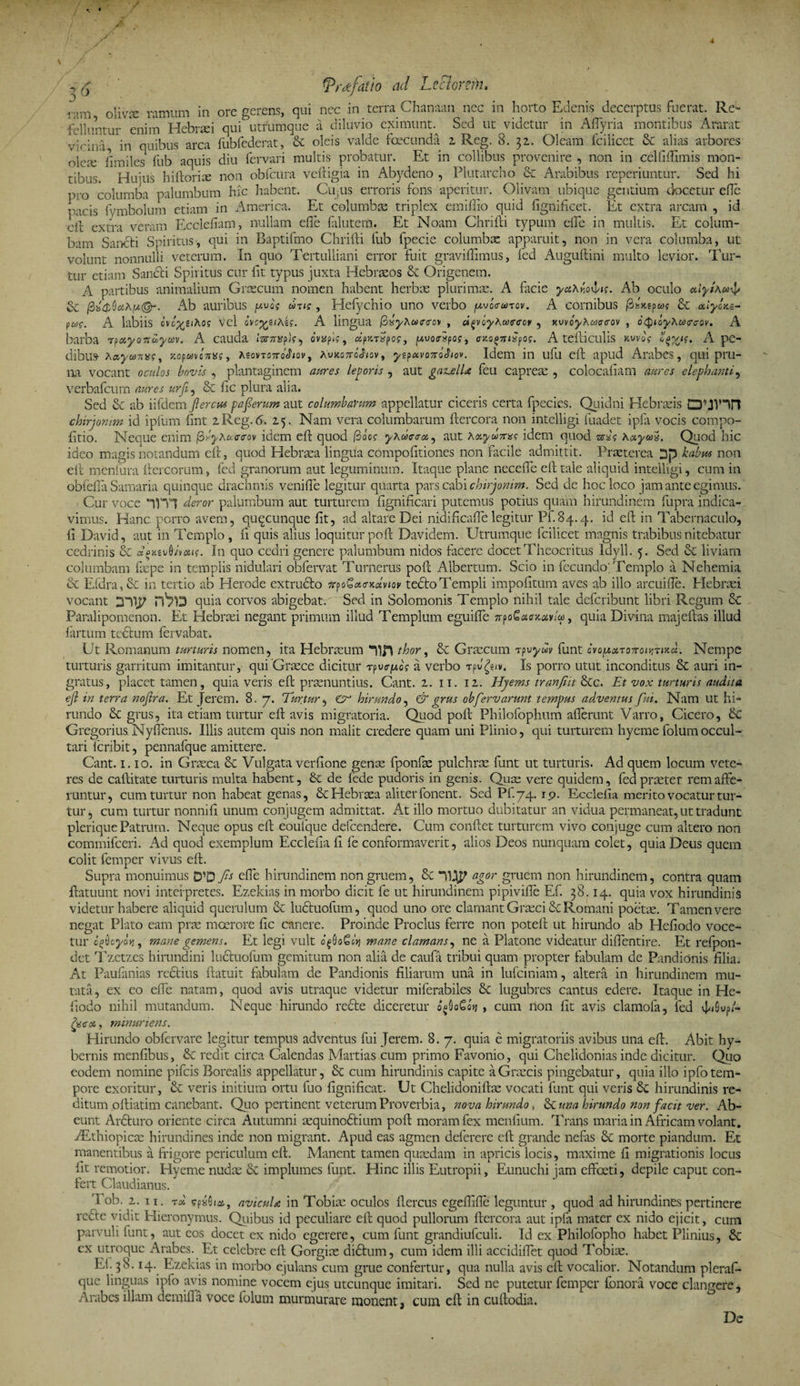 ram 0\[vx ramum in ore gerens, qui nec in terra Chanaan nec in horto Edenis decerptus fuerat. Re- feliuntur enim Hebraei qui utrumque a diluvio eximunt. Sed ut videtur in Aflyria montibus Ararat vicina in quibus arca fubfederat, Sc oleis valde foecunda 2 Rcg. 8. 32. Oleam fcilicet &amp; alias arbores olea; fi miles fub aquis diu fervari multis probatur. Et in collibus provenire , non in celfiftimis mon¬ tibus. Huius hiftorix non obfcura veftigia in Abydeno , Plutarcho &amp; Arabibus reperiuntur. Sed hi pro columba palumbum hic habent. Cu;us erroris fons aperitur. Olivam ubique gentium docetur ede pacis fymbolum etiam in America. Et columbae triplex em i ilio quid fignificet. Et extra arcam , id cil extra veram Ecclefiam, nullam efie falutem. Et Noam Chrifti typum eife in multis. Et colum¬ bam Sancti Spiritus, qui in Baptifmo Chriiti iub fpecie columbae apparuit, non in vera columba, ut volunt nonnulli veterum. In quo Tertulliani error fuit graviflimus, fed Auguftini multo levior. Tur¬ tur etiam Sancti Spiritus cur iit typus juxta Hebraeos &amp; Origenem. A partibus animalium Graecum nomen habent herbas plurimae. A facie yotK^ig. Ab oculo ctiyih &amp; flh&amp;Qoi*.u@r. Ab auribus yvos wtis, Hefychio uno verbo yvoo-anov. A comibus St alyUz- pwg. A labiis evq^giAo? vel ovc%pt\is. A lingua fitsyAoixrfov » «^oyKuiffeov , Kvvoyhcasffov , oQioyhotxraov. A barba rpxyosrayoov. A cauda <ar/Tgpk, ovsspk, dp^rSpos, yvorxpos, ffxofTnxpos. A tefticulis kvvos A pe¬ dibus- Kayamxs y xopavonus, Movto7tq^iov t Ao>co7ro<hov, yepcivonoJiov. Idem in ufu eit apud Arabes, qui pru¬ na vocant oculos bovis , plantaginem aures leporis , aut gascelU feu capreae , colocaiiam aures elephanti, verbafcum aures urfi, St iic plura alia. Sed St ab iifdemj?mw paferum aut columbarum appellatur ciceris certa fpecies. Quidni Hebraeis chirjomm id iplum fint zReg.6. 25. Nam vera columbarum itercora non intelligi fuadet ipfa vocis compo- fitio. Neoue enim (Sx^Aao-c-ov idem eit quod $00? y\u>cr<roi^ aut \ayu7rxs idem quod araV aaywds. Quod hic ideo magis notandum eit, quod Hebraea lingua compofitiones non facile admittit. Praeterea 3p habm non eit menfura itercorum, fed granorum aut leguminum. Itaque plane neceffe eit tale aliquid intelligi, cum in obfeifa Samaria quinque drachmis veniile legitur quarta pars cabi chirjomm. Sed de hoc loco jam ante egimus. Cur voce IVYt deror palumbum aut turturem fignificari putemus potius quam hirundinem fupra indica¬ vimus. Hanc porro avem, quqcunque iit, ad altare Dei nidificaffe legitur Pf.S4.4. id eit in Tabernaculo, fi David, aut in Templo , fi quis alius loquitur poit Davidem. Utrumque fcilicet magnis trabibus nitebatur cedrinis St xfKtvOJvotH. In quo cedri genere palumbum nidos facere docet Theocritus ldyll. 5. Sed St liviam columbam fiepe in templis nidulari obfervat Turnerus poit Albertum. Scio in fecundo; Templo a Nehemia &amp; Efdra, St in tertio ab Herode extructo jrpo€«<r>i#'vio»> tedto Templi impolitum aves ab illo arcuiile. Hebraei vocant Xlip quia corvos abigebat.' Sed in Solomonis Templo nihil tale deferibunt libri Regum St Paralipomenon. Et Hebrmi negant primum illud Templum eguiffe npo^aamvlu, quia Divina majeitas illud fartum tedturn fervabat. Ut Romanum turturis nomen, ita Hebraeum thor, St Graecum tpvyuv funt ovopotToiroitiTmu. Nempe turturis garritum imitantur, qui Graece dicitur rpvtryos a verbo rpvgeiv. Is porro utut inconditus St auri in¬ gratus, placet tamen, quia veris eft praenuntius. Cant. 2. 11. 12. Hjems tranfiit Stc. Et vox turturis audita ejl in terra nojlra. Et Jerem. 8. 7. Turtur, Cr hirundo, &amp; grus obfervarunt tempus adventus fui. Nam ut hi¬ rundo St grus, ita etiam turtur eft avis migratoria. Quod poft Philofophum allerunt Varro, Cicero, Sc Gregorius.Nyfienus. Illis autem quis non malit credere quam uni Plinio, qui turturem hyeme folumoccul¬ tari feribit, pennafque amittere. Cant. 1.10. in Graeca St Vulgata verhone genae fponfae pulchrae funt ut turturis. Ad quem locum vete¬ res de caftitate turturis multa habent, St de fede pudoris in genis. Quae vere quidem, fed praeter rem affe¬ runtur, cum turtur non habeat genas, &amp; Hebraea aliter fonent. Sed Pf.74. 19. Ecclefia merito vocatur tur¬ tur, cum turtur nonnifi unum conjugem admittat. At illo mortuo dubitatur an vidua permaneat, ut tradunt pleriquePatrum. Neque opus eft eoufque defeendere. Cum conflet turturem vivo conjuge cum altero non commifceri. Ad quod exemplum Ecclefia fi fe conformaverit, alios Deos nunquam colet, quia Deus quem colit femper vivus eft. Supra monuimus D’D fi* effe hirundinem non gruem, St “U3T agor gruem non hirundinem, contra quam ftatuunt novi interpretes. Ezekias in morbo dicit fe ut hirundinem pipivifte Ef. 38.14. quia vox hirundinis videtur habere aliquid querulum St ludtuofum, quod uno ore clamant Graeci &amp; Romani poetae. Tamen vere negat Plato eam prae moerore fic canere. Proinde Proclus ferre non poteft ut hirundo ab Hefiodo voce¬ tur o^oyotj 9 mane gemens. Et legi vult o§0o6«j mane clamans, ne a Platone videatur diffentire. Et refpon- det Tzetzes hirundini ludtuofum gemitum non alia de caufa tribui quam propter fabulam de Pandionis filia. At Paufanias rectius ftatuit fabulam de Pandionis filiarum una in lufciniam, altera in hirundinem mu¬ tata, ex eo effe natam, quod avis utraque videtur miferabiles Se lugubres cantus edere. Itaque in He¬ fiodo nihil mutandum. Neque hirundo redte diceretur d§0o6ojj , cum non fit avis clamofa, fed 4Cp/- £s<roij minuriens. Hirundo obfervare legitur tempus adventus fui Jerem. 8. 7. quia e migratoriis avibus una eft. Abit hy- bernis menfibus, St redit circa Calendas Martias cum primo Favonio, qui Chelidonias inde dicitur. Quo eodem nomine pifeis Borealis appellatur, St cum hirundinis capite a Graecis pingebatur, quia illo ipfo tem¬ pore exoritur, St veris initium ortu fuo fignificat. Ut Chelidoniftae vocati funt qui veris St hirundinis re¬ ditum oftiatim canebant. Quo pertinent veterum Proverbia, nova hirundo, Se una hirundo non facit ver. Ab¬ eunt Ardturo oriente circa Autumni aequinodtium poft moram fex menfium. Trans maria in Africam volant. fEthiopicre hirundines inde non migrant. Apud eas agmen deferere eft grande nefas Se morte piandum. Et manentibus a frigore periculum eft. Manent tamen quaedam in apricis locis, maxime fi migrationis locus fit remotior. Hyeme nudae Se implumes funt. Hinc illis Eutropii, Eunuchi jam effoeti, depile caput con¬ fert Claudianus. I ob. 2. 11. T» avicula in Tobiae oculos flercus egeftifie leguntur , quod ad hirundines pertinere refte vidit Hieronymus. Quibus id peculiare eft quod pullorum ftercora aut ipfa mater ex nido ejicit, cum parvuli funt, aut eos docet ex nido egerere, cum funt grandiufculi. Id ex Philofopho habet Plinius, Se ex utroque Arabes. Et celebre eft Gorgiae di£tum, cum idem illi accidilTet quod Tobiae. Ef. 3S. 14. Ezekias in morbo ejulans cum grue confertur, qua nulla avis eft vocalior. Notandum plerafi- que linguas ipfo avis nomine vocem ejus utcunque imitari. Sed ne putetur femper fonora voce clangere, Arabes illam denuda voce folum murmurare monent, cum eft in cuftodia. De