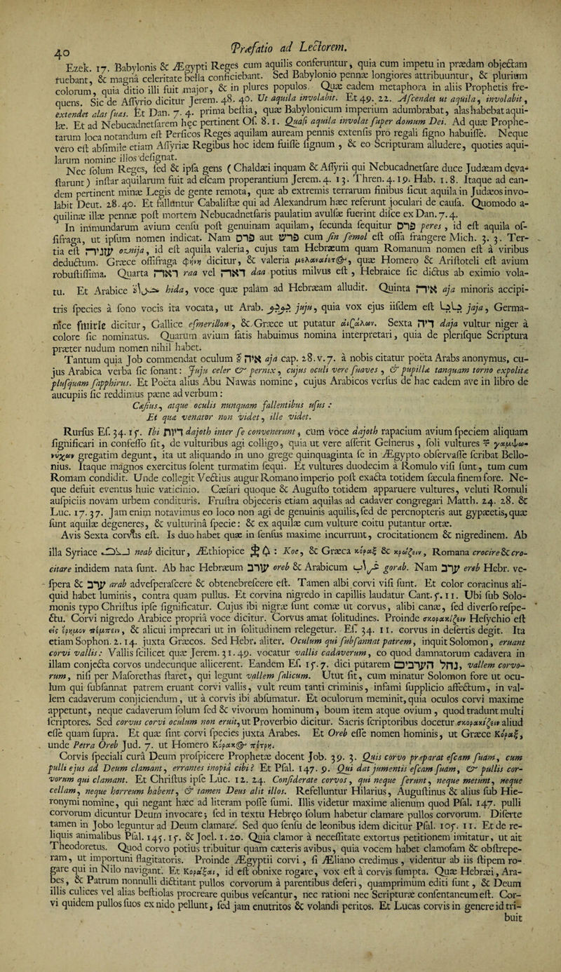 Ezek 17 Babylonis Sc iEgypti Reges cum aquilis conferuntur, quia cum impetu in praedam objectam tuebant* &amp; magna celeritate bella conficiebant. Sed Babyloni* pennas longiores attribuuntur, &amp; plurium colorum, quia ditio illi fuit major, &amp; in plures populos, Quae eadem metaphora in aliis Prophetis fre¬ quens. Sic de Aflyrio dicitur Jerem. 48. 40. Ut aquila involabit. Et 49. 22. slfcendet ut aquila, involabit, extendet alas fu as. Et Dan. 7. 4. prima beftia, quas Babylonicum imperium adumbrabat, alas habebat aqui¬ la Et ad Nebucadnetfarem hec pertinent Of. 8.1. Quali aquila involat fuper domum Dei. Ad qute Prophe¬ tarum loca notandum eft Perficos Reges aquilam auream pennis extenfis pro regali figno habuifle. Neque vero eft abfimile etiam Afiyriae Regibus hoc idem fuifle fignum , Sc eo Scripturam alludere, quoties aqui¬ larum nomine illos defignat. Nec folum Reges, fed Sc ipfa gens (Chaldaei inquam &amp;: Afiyrii qui Nebucadnetfare duce Judaeam deva- ftarunt) inftar aquilarum fuit adefeam properantium Jerem.4. 13. Thren. 4. ip^Hab. 1.8. Itaque ad ean¬ dem pertinent minas Legis de gente remota, quas ab extremis terrarum finibus iicut aquila in Judasosinvo¬ labit Deut. 28.40. Et fiilldntur Cabaliftas qui ad Alexandrum haec referunt joculari de caufa. Quomodo a- quilinse illae pennae poft mortem Nebucadnetfaris paulatim avulfas fuerint difee ex Dan. 7.4. 1 In immundarum avium cenfu poft genuinam aquilam, fecunda fequitur feres, id eft aquila of- fifraga, ut ipfum nomen indicat. Nam D“lD aut cum/» femol eft ofia frangere Midi. 3. 3. Ter¬ tia eft oinija, id eft aquila valeria, cujus tam Hebraeum quam Romanum nomen eft a viribus deductum. Graece oflifraga cpfr*i dicitur, Sc valeria [Mhotvahr^r1, quae Homero Sc Ariftoteli eft avium robuftiftima. Quarta raa vel daa potius milvus eft , Hebraice fic didtus ab eximio vola¬ tu. Et Arabice hida, voce quae palam ad Hebraeam alludit. Quinta aja minoris accipi¬ tris fpecies a fono vocis ita vocata, ut Arab. juju, ftuia vox ejus iifdem eft Lata jaja, Germa¬ nice fhlirfe dicitur, Gallice efmerillon , Sc.Graece ut putatur c&amp;ifc&amp;Am, Sexta JTI daja vultur niger a colore fic nominatus. Quarum avium fatis habuimus nomina interpretari, quia de plenfque Scriptura praeter nudum nomen nihil habet* Tantum quia Job commendat oculum I ITft aja cap. 28. v.7. a nobis citatur poeta Arabs anonymus, cu¬ jus Arabica verba fic fonant: Juju celer pernix, cujus oculi vere fi'naves , &amp; pupilla tanquam torno expolita plufquam fapphirus. Et Poeta alius Abu Nawas nomine, cujus Arabicos verfus de hac eadem ave in libro de aucupiis fic reddimus paene ad verbum : Cajius, atque oculis nunquam fallentibus ufus : Et qua venator non videt, ille videt. Rurfus Ef. 34.17. Ibi J11H dajoth inter fe convenerunt, cUm voce dajoth rapacium avium fpeciem aliquam fignificari in confefio fit, de vulturibus agi colligo, quia ut vere aflerit Gefnerus , foli vultures r yotuSv vv%uv gregarim degunt, ita ut aliquando in uno grege quinquaginta fe in fiEgypto obfervafle feribat Bello- nius. Itaque magnos exercitus folent turmatim fequi. Et vultures duodecim a Romulo vifi funt, tum cum Romam condidit. Unde collegit VeStius augur Romano imperio poft exadta totidem fecula finem fore. Ne¬ que defuit eventus huic vaticinio. Caelari quoque Sc Augufto totidem apparuere vultures, veluti Romuli aufpiciis novam urbem condituris. Fruftra objeceris etiam aquilas ad cadaver congregari Matth. 24. 28. Sc Luc. 17. 37. Jam enim notavimus eo loco non agi de genuinis aquilis, fed de perenopteris aut gypacetis, quae fiunt aquilae degeneres, Sc vulturina fipecie: Sc ex aquilae cum vulture coitu putantur orte. Avis Sexta coiMis eft. Is duo habet quae in fenfus maxime incurrunt, crocitationem &amp; nigredinem. Ab illa Syriace neab dicitur, zEthiopice ^ 01 • K°e? Graeca »op«§ Sc *?UXSIV* Romana crocire Sc cro¬ citare indidem nata funt. Ab hac Hebraeum D11P oreb &amp; Arabicum gorab. Nam ersb Hebr. ve- fpera Sc y\J/ arab advefperafcere Sc obtenebrefeere eft. Tamen albi corvi vifi funt. Et color coracinus ali¬ quid habet luminis, contra quam pullus. Et corvina nigredo in capillis laudatur Cant.y. 11. Ubi fub Solo- monis typo Chriftus ipfe fignificatur. Cujus ibi nigrae funt comae ut corvus, alibi canae, fed diverforefpe- £tu. Corvi nigredo Arabice propria voce dicitur. Corvus amat folitudines. Proinde mopoutlgiiv Hdychio eft «V tfyiuov itifXTreiVy Sc alicui imprecari ut in folitudinem relegetur. Ef 34. 11. corvus in defertis degit. Ita etiam Sophon. 2.14. juxta Graecos. Sed Hebr. aliter. Oculum qui fubf 'annat patrem, inquit Solomon, eruant corvi vallis: Vallis fcilicet quae Jerem. 31.49. vocatur vallis cadaverum, eo quod damnatorum cadavera in illam conjeda corvos undecunque allicerent. Eandem Ef* 17.7. dici putarem 'TIU, vallem corvo¬ rum, nifi per Maforethas ftaret, qui legunt vallem falicum. Utut fit, cum minatur Solomon fore ut ocu¬ lum qui fubfannat patrem eruant corvi vallis, vult reum tanti criminis, infami fupplicio affe&amp;um, in val¬ lem cadaverum conjiciendum, ut a corvis ibi abfumatur. Et oculorum meminit,quia oculos corvi maxime appetunt, neque cadaverum folum fed Sc vivorum hominum, boum item atque ovium , quod tradunt multi feriptores. Sed corvus corvi oculum non eruit, ut Proverbio dicitur. Sacris feriptoribus docetur ffxopxKtfyiv aliud efle quam fupra. Et quae fint corvi fpecies juxta Arabes. Et Oreb elfe nomen hominis, ut Graece Kepaf, unde Petra Oreb Jud. 7. ut Homero Kcp<xx&amp; ntTfyji Corvis fpeciali cura Deum profpicere Prophete docent Job. 39. 3. Quis corvo prrfarat efcam fuam, cum pulli ejus ad Deum clamant, errantes inopia cibi? Et Pfal. 147. <?. Qui dat jumentis efcam fuam, pullis cor¬ vorum qui clamant. Et Chriftus ipfe Luc. 12. 24. Conjiderate corvos, qui neque ferunt, neque metunt, neque cellam, neque horreum habent, &amp; tamen Deus alit illos. Refelluntur Hilarius, Auguftinus Sc alius fub Hie¬ ronymi nomine, qui negant ltec ad literam pofie fumi. Illis videtur maxime alienum quod Pfal. 147. pulli corvorum dicuntur Deurn invocare 5 fed in textu Hebrqo folum habetur clamare pullos corvorum. Diferte tamen in Jobo leguntur ad Deum clamare. Sed quo fenfu de Iconibus idem dicitur Pfal. 107. 11. Et de re¬ liquis animalibus Pfal. 145.17. Sc Joel. 1.20. Quia clamor a neceflitate extortus petitionem imitatur, ut ait Theodoretus. Quod corvo potius tribuitur quam caeteris avibus, quia vocem habet clamofam Sc obftrepe- ram, ut importuni flagitatoris. Proinde fEgyptii corvi, fi ./Eliano credimus , videntur ab iis ftipem ro¬ gare qui in Nilo navigant. Et Kop«|«/, id eft obnixe rogare, vox eft a corvis fumpta. Qyae Hebraei, Ara- bes, Sc Patrum nonnulli di&amp;itant pullos corvorum a parentibus deferi, quamprimum editi funt, Sc Deum illis culices vel alias beftiolas procreare quibus vefcantur, nec rationi nec Scripturae confentaneum eft. Cor¬ vi quidem pullos fuos ex nido pellunt, fed jam enutritos Sc volandi peritos. Et Lucas corvis in genere id tri¬ buit