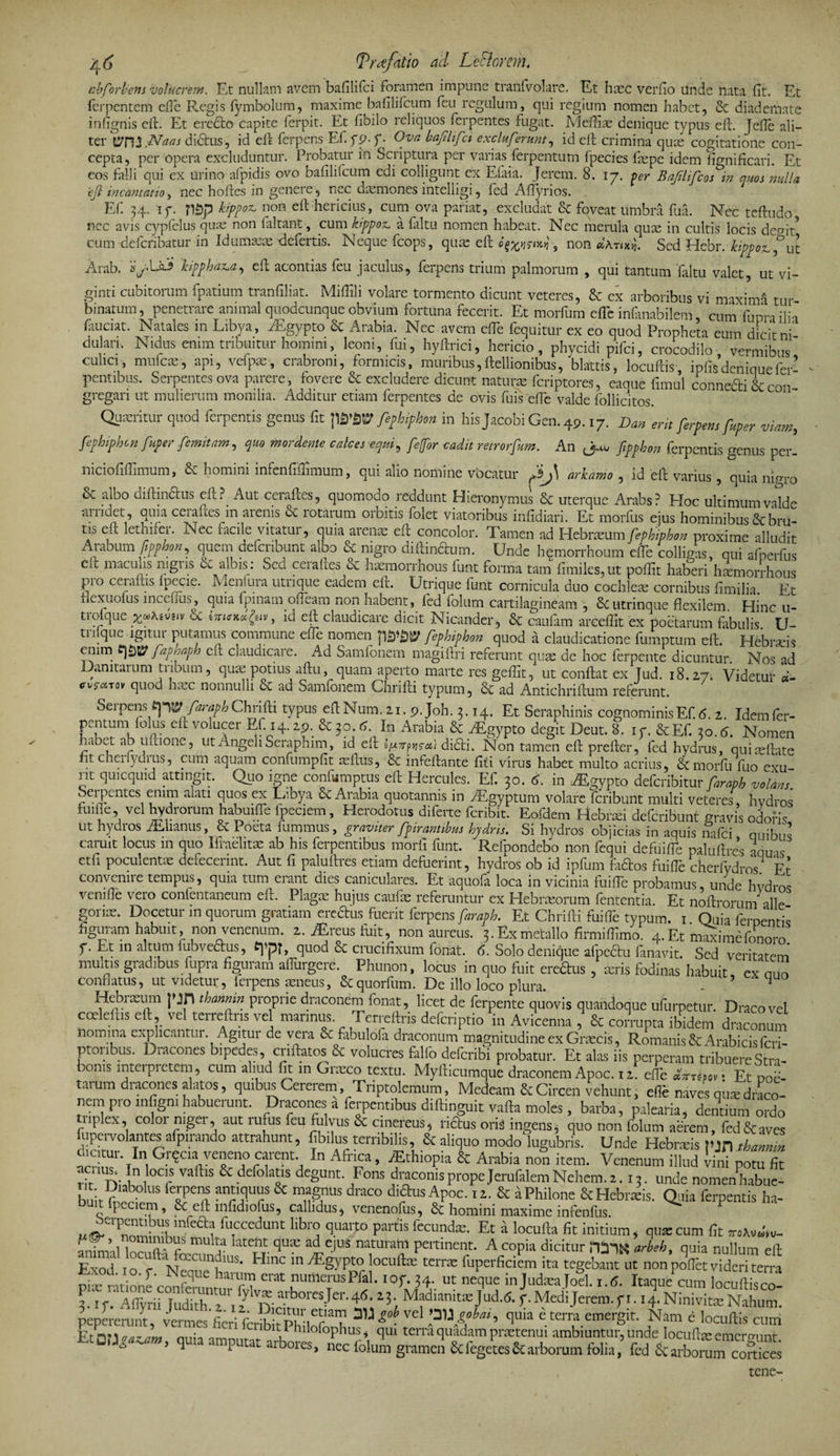 nbforbens volucrem. Et nullam avem bafilifci foramen impune tranfvolare. Et haec verfio Unde nata fit. Et ferpentem efie Regis fymbolum, maxime bafilifcum feu regulum, qui regium nomen habet, &amp; diademate infignis eft. Et eredlo capite ferpit. Et fibilo reliquos ferpentes fugat. Meftiae denique typus eft. Jefte ali¬ ter VnJ Naas didftis, id eft ferpens Ef.fp-f- Ova bafilifci excluferunt, id elt crimina quas cogitatione con¬ cepta, per opera excluduntur. Probatur in Scriptura per varias ferpentum fpecies fiepe idem fignificari. Et eos falli qui ex Urino afpidis ovo bafilifcum edi colligunt ex Efaia. Jercm. 8. 17. per Bafilifcos in quos nulla efi incantatio, nec hoftes in genere , nec daemones intelligi, fed A (Tyrios. Ef. 34. If. nsp kippoz. non elb hericius, cum ova pariat, excludat &amp; foveat umbra fua. Nec teftudo nec avis cypfelus quae non faltant, cum kippoz, a faltu nomen habeat. Nec merula qux in cultis locis degit* cum defcribatur in Idumaeae defertis. Neque fcops, quas eft , non Sed Hebr. kippoz,* ut Arab. vLa3 kipphaiLa, efi; acontias feu jaculus, ferpens trium palmorum , qui tantum faltu valet, ut vi- ginti cubitorum fpatium tranfiliat. Miffili volare tormento dicunt veteres, &amp; ex arboribus vi maximi tur binatum, penetrare animal quodcunque obvium fortuna fecerit. Et morfum efie infanabilem cum fupra ilii fauciat. Natales m Libya, rEgypto &amp; Arabia. Nec avem efie fequitur ex eo quod Propheta eum dicit ni dulan. Nidus enim tribuitur homini, leoni, fui, hyftrici, hericio, phycidi pifci, crocodilo vermibus culici, mufcae, api, vefpae, crabroni, formicis, muribus, ftellionibus, blattis, locuftis, ipfis denique Er’ pentibus. Serpentes ova parere , fovere &amp; excludere dicunt naturae feriptores, eaque fimul connecti &amp; com- gregari ut mulierum monilia. Additur etiam ferpentes de ovis fuis efie valde follicitos. Quaeritur quod ferpentis genus fit Jfephiphon in his Jacobi Gen. 49.17. Dan erit ferpens fuper viam, fephiphon fuper femitam, quo mordente calces equi, fejfor cadit retrorfum. An fipphon ferpentis genus per- niciofifiimum, &amp; homini infenfifiimum, qui alio nomine vocatur ^J\ arkamo , id efi varius , quia nigro &amp; albo diftindtus efi:?. Aut ceraftes, quomodo reddunt Hieronymus &amp; uterque Arabs? EIoc ultimum valde amdet , quia ceiaftes in arenis ce lotarum orbitis folet viatoribus infidiari. Et morfus ejus hominibus &amp; bru¬ tis efi: lethifer. Nec facile vitatur, quia arens: efi concolor. Tamen ad Hebraeum fephiphon proxime alludit Aiabum fipphon, quem deferiount aloo &amp; nigro diftindtum. Unde hemorrhoum efie colligas, qui afperfus elt maculis nigns 6». albis: Sed ceiaftes &amp; haemorrhous funt forma tam fimiles,ut pofiit haberi haemorrhous pro ceraftis Ipecie. Menfura utrique eadem efi. Utrique funt cornicula duo cochleae cornibus fimilia. Et fiexuolus mcefius, quia fpinam ofieam non habent, fed folum cartilagineam ', 6e utrinque flexilem Hinc u- trolque , id eft claudicare dicit Nicander , &amp; caufam areeflit ex poetarum fabulis U- tnique igitur putamus commune efie nomen p£jW fephiphon quod a claudicatione fumptum eft. Hebraeis enim ^ faphaph eft claudicare. Ad Samfonem magiftri referunt quae de hoc ferpente dicuntur. Nos ad Danitaium tubum, quae potius aftu, quam aperto marte res geflit, ut confiat ex Tud. 18.27. Videtur «- W*™ quod haec nonnulli &amp; ad Samfonem Chrifti typum, &amp; ad Antichriftum referunt. Serpens faraph Chn fti typus eft Num. 21. 9. Joh. 3.14. Et Seraphinis cognominis Ef. <5. 2. Idem fer¬ pentum (olus elt volucer Ef. 14.29. &amp; 30.6. In Arabia &amp; HLgypto degit Deut. 8. ir. &amp;Ef. 20.6. Nomen h.ibeL ab ultione, ut Angeli Seraphim, id eft ijuTrprca) di£ti. Non tamen eft prefter, fed hydrus, quiseftate tit cheilycms, cum aquam confumpfit silus, &amp; infeftante fiti virus habet multo acrius, &amp; morfu fuo exu nt quicquid attingit. Quo igne confumptus eft Hercules. Ef. 30. 6. in iEgypto deferibitur faraph volans. Seipentes enim alati quos ex Libya &amp; Arabia quotannis in TEgyptum volare feribunt multi veteres hydros fuilie, vel hydrorum habmffe fpecjem, Herodotus diferte feribit. Eofdem Hebraei deferibunt gravis odoris ut hydros /Elianus, &amp; Poeta fummus, graviter fpirantibus hydris. Si hydros objicias in aquis nafei quibus caruit locus m quo Ifraelitae ab his ferpentibus morfi funt. ^Refpondebo non fequi defuifie paluftres aquas etft poculentae defecerint. Aut fi paluftres etiam defuerint, hydros ob id ipfum fadtos fuifie cherfydros. Et convenire tempus, quia tum erant dies caniculares. Et aquofa loca in vicinia fuifie probamus unde hvdros vemfie vero confentaneum eft. Plagae hujus caufie referuntur ex Hebraeorum fententia. Et noftrorum alie gonx. Docetur in quorum gratiam eredtus fuerit ferpens faraph. Et Chrifti fuifie typum. 1 Quia Ementis figuram habuit, non venenum. 2. iEreus fuit, non aureus. 3. Ex metallo firmiffimo. 4. Et mSimefonoro f- Et 111 altum fubvedus, e]»pT, quod &amp; crucifixum fonat. 6. Solo denique afpeffcu fanavit. Sed veritatem imutis gradibus fupra figuram afiurgere. Phunon, locus in quo fuit erecftus , xris fodinas habuit ex aZ conflatus, ut videtur, lcrpens aeneus, &amp;quorfum. De illo loco plura. - 3 1 Hebi xum pjH thannin proprie draconem fonat, licet de ferpente quovis quandoque ufurpetur. Draco vel ccelefhs ert vel terreftns vel mannus Terreftris deferiptio in Avicenna , &amp; con-upta ibidem draconum nomina explicantur Agitur de vera &amp; fabulola draconum magnitudine ex Gnecis, Romanis &amp; Arabicis fer- ptonbus. Dracones bipedes, criftatos &amp; volucres falfo deferibi probatur. Et alas iis perperam tribuereStra- boms interpretem, cum aliud fit in Cisco textu. Myfticumque draconem Apoc. t z. e(Te &amp;rn,o,s Et noL taium dracones alatos, quibus Cererem, Triptolemum, Medeam &amp; Circen vehunt, efie naves qute draco¬ nem pro mfigmhabuerunt. Dracones a ferpentibus diftinguit vafta moles, barba, palearia, dentium ordo triplex, color niger, aut rufus feu fulvus Sc cinereus, riSus oris ingens, quo non folum aerem, fed&amp;aves fupervolantes afpirando attrahunt, fibilus terribilis, &amp; aliquo modo lugubris. Unde Hebneis inn thannin ^r?iCU1*TIni Gr?Cia/e^T r1ienth In » ^thiopia &amp; Arabia non item. Venenum illud vini potu fit rir v ln,l0Cr Vaft’S &amp; def0lT degUnL F°ns ^racon’spropeJerufalemNehem.a. 13. unde nomenhabue- buir Ab0 US felpen anr?UrS &amp; draco diflusApoc. ,i. &amp; aPhilone &amp; Hebrus. Q,,ia ferpentis ha- fuccedunt libro quarto partis fecunda;. Et a locufta fit initium, qua: cum fit ™W,v- 'X’,multa latent ad ejus naturam pertinent. A copia dicitur rOlK arheh, quia nullum eft S .A Hinc in ^gyPt0 loCl,ft£c tcrrE foperficion ita tegebam ut nonpoVvTderherra mt one cSnnAn “ume™sPfal- 34- ut neque mjud.xajoel. 1.5. Itaquecnm locuftisco- 3.i f Aflyrfi JudTz a Dich Sje‘‘' tlf 3a M?dianita= Jud-6- f• MediJerem. f 1..4. Ninivitte Nahum. pepererunt, vermes fieri feribitPhilofoT ^ VC ^uia e terra emergit. Nam e locuftis cum Fr rv 1 aar/int nui-, o 1 hl‘°^°P^us > fltu terra quadam praetenui ambiuntur, unde locufhe emermmt Et0Osazm, quia amputat arbores, nec folum gramen &amp;fegetes&amp;arborum folia, fed &amp;arCm cortees tene-