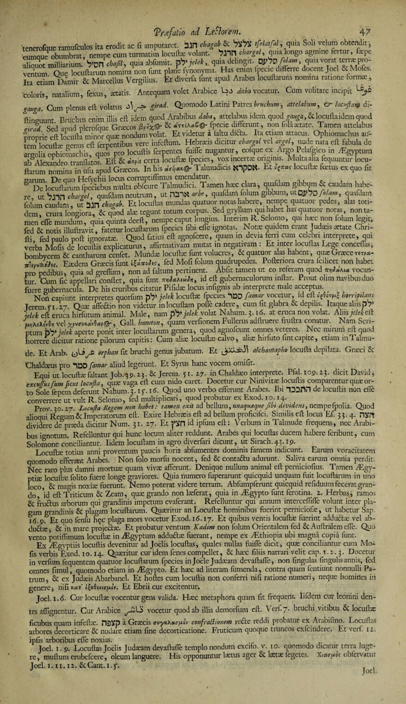 Wrofque ramufculos ita erodit ac fi amputaret. 3jn eb£d>Jc 'f&amp;S tfiUnfd, quia Soli velum obtendit , eumnue obumbrat, nempe cum turmatim locufia: volant. chargol, quia longo agmme fertur, fepe 3miniarium.SwiV. <P» abfumit. tirjelei,. quia deling,t.DJt>D/^»,quta vorat terra pro¬ ventum Que locuftarum nomina non funt plane fynonyma. Has enim fpecie diffene docent Joel &amp; N o es. Ita etiam Damir &amp; Marcellus Vergilius. Et diverfa funt apud Arabes locuftarum nomina ratione forma:, coloris, natalium, fexus, statis. Antequam volet Arabice dnha vocatur. Cana volitare incipit Ls>i gmga. Cum plenus eil: volatus .£*«*■ Quomodo Latini Patres bruchum', atteidum, Cr Itcuftm di- ftineuunt Bruchus enim illis eft idem quod Arabibus data, attelabus idem quod\jm£a, &amp;locuftaidem quod „rad Sed apud plerofque Gracos &amp; «t4ji«6©-fotoe differunt, non folastate. Tamen attelabus proprie eft locufta minor qute nondum volat Et videtur a faltu dl£ta. Ita etiam attacus Ophiomachus au¬ tem locufta’ genus eft ferpentibus vere infeftum. Hebrais dicitur chargol vel argcl, nude nata eft fabula de amolis oohiomachis. quos pro locuftis ferpentes fuifle nugantur, eolque ex Argo Pelafgico m aEgyptum ab&amp;Alexandro tranflatos Eft &amp; «*fh certa locufta: fpecies, vox incerta: originis. Multa alia fequuntur locu¬ ftarum nomina in ufu apud Gracos. In his «4«*®- Talmudicis tOpOK- Et.'{*■« locuftae foetus ex quo fit 8^i(^ft^°m^letamulw0ffire T^rnudlci^Tamen hicc clara-, quafdam gibbtjm &amp; caudam habe¬ re utbnn charzol, quafdam neutrum, ut nnSfffc, quafdam folum gibbum, ut D^D/^w, quafdam folum caudam, ut 3Jn chajrab. Et locuftas mundas quatuor notas habere, nempe quatuor pedes, alas toti¬ dem, crura longiora, &amp; quod alae tegunt totum corpus. Sed gryllum qui habet has quatuor notas non ta¬ men efle mundum, quia quinta deeft, nempe caput longius. IntenmR. Selomo, qui haec non folum legit, fed &amp; notis illuftravit, fatetur locuftarum fpecies fibt elle ignotas. Nota: quidem erant ludatis aetate Chri- fti, fed paulo poft ignorata:. Quod fatius eft agnofcere, quam in devia ferri cum celebri interprete, qui verba Molis de locuftis explicaturus, affirmativam mutat m negativam : Et inter ocuftas Lege conceflas, bombvcem &amp; cantharum cenfet. Mundae locufta; funt volucres, Sc quatuor alas habent, qux Grace tsrpa- tftfiihs. Exdem Gracis funt S|«W«, fed Mofi folum quadrupedes. Poftenora crura fcihcet non habet pro pedibus, quia ad greffum, non ad [altum pertinent. Abfit tamen ut eo reteram quod *,»ihut vocan- tur. Cum fic appellari conflet, quia funt id efl gubernaculorum lnftar. Prout olim navibus duo fuere gubernacula. De his cruribus citatur Pifidae locus infignis ab intei piete male acceptus. Noli capiunt interpretes quorflim py9 jelek locuftae fpecies 1DD /timar vocetui, id efl o^Sorpif horripilans Terem.fi.27. Quae affectio non videtur inlocuftam pofle cadere, cum fit glabra &amp; depilis. Itaque aliisDT jelek eft eruca hirfutum animal. Male, nam py* jelek volat Nahum. 3.16. at eiuca non volat. AXmjele.cefl mKo-kMn vel , Gall. hancton, quam verfionem Fullerus adftruere fruflra conatur. Nam Scri¬ ptura bV jelek aperte ponit inter locuftarum genera, quod agriofeunt omnes veteres. Nec mirum eft quod horrere dicitur ratione pilorum capitis: Cum alias locuftas calvo, alias lurfuto hntcapite, etiam inTalmu- de. Et Arab. orphan fit bruchi genus jubatum. Et akharttapho locufta depilata. Grasci &amp; Chaldaeus pro 1DD famar aliud legerunt. Et Syrus hanc vocem omifit. Equi ut locuftas faltant Job.39.23. &amp; Jerem. 51. 27- in Chaldaeo interprete. Pfal. 109. 23. dicit David3 excuffus fum ftcut locufta, quae vaga eft cum nido caret. Docetur cur Ninivitae locuftis comparentur quas or- to Sole fepem deferunt Nahum.3. if. 16. Quod uno verbo efferunt Arabes. Ibi “TOnn de locuftis non efle converrere ut vult R. Selomo, fed multiplicari, quod probatur ex Exod. 10.14. Prov. 20.27. Locufta Regem non habet: tamen exit ad bellum, unaquaque fibt dividens, nempe (polia. Quod alioqui Regum &amp; Imperatorum eft. Exire Hebraeis eft ad bellum proficifci. Similis eft locus Ef. 33.4. HKffi dividere de praeda dicitur Num. 31. 27. Et pn id ipfum eft: Verbum in Talmude frequens, nec Arabi¬ bus ignotum. Refelluntur qui hunc locum aliter reddunt. Arabes qui locuftas ducem habere feribunt, cum Solomone conciliantur. Iidem locuftam in agro diverfari dicunt, ut Sirach.43. ip. Locuftae totius anni proventum paucis horis abfumentes dominis fiimem indicunt. Earum voracitatem quomodo efferant Arabes. Non folo morfu nocent, fed &amp; conta&amp;u adurunt. Saliva earum omnia perdit. Nec raro plus damni mortuae quam vivae afferunt. Denique nullum animal eft perniciofius. Tamen fEgy- ptiae locuftae folito fuere longe graviores. Quia numero fuperarunt quicquid unquam fuit locuftarum in uno loco, &amp; magis noxiae fuerunt. Nemo poterat videre terram. Abfumpferunt quicquid refiduum fecerat gran¬ do *id eft Triticum Zeam, quae grando non laeferat, quia in iEgypto funt ferotina. 2. Herbas, ramos fructus arborum qui grandinis impetum evaferant. Refelluntur qui annum interceffifte volunt inter pla¬ gam grandinis Sc plagam locuftarum. Quaeritur an Locuftae hominibus fuerint perniciofae, ut habetur Sap. 16.9. Et quo fenfu h^c plaga mors vocetur Exod. 16. 17. Et quibus ventis locuftae fuerint adduftae vel ab¬ ductae , Sc in mare projectae. Et probatur ventum Kadim non folum Orientalem fed Sc Auftralem efle. Quo vento potiftimum locuftae in iEgyptum addu&amp;ae fuerant, nempe ex fEthiopia ubi magna copia funt. Ex fEgyptiis locuftis devenitur ad Joelis locuftas, quales nullas fuifle dicit, quae conciliantur cum Mo~ fis verbis Exod. 10.14. Quaeritur cur idem fenes compellet, Sc haec filiis narrari velit cap. 1.2.3. Docetur in verfum fequentem quatuor locuftarum fpecies in Joele Judaeam devaftafle, non fingulas fingulis annis, fed omnes fimul, quomodo etiam in Aegypto. Et haec ad literam fumenda, contra quam fentiunt nonnulli Pa¬ trum, Sc ex Judaeis Abarbanel. Et holtes cum locuftis non conferri nifi ratione numeri, neque homiiies iri genere^ nifi Et Ebrii cur excitentur Joel. i. 6. Cur locuftae vocentur gens valida. Hasc metaphora quam fit frequens. Iifdem cur leonini den¬ tes aflignentur. Cur Arabice vocetur quod ab illis demorfum eft. Verf 7. bruchi vitibus Sc locuftas ficubus quam infeftae. pJiDSp a Graecis confrathonem re£te reddi probatur ex Arabifmo. Locuftas arbores cecorticare Sc nudare etiam fine decorticatione. Fruticum quoque tiuncos exfcindeie. Et veif. 12. ipfis arboribus efle noxias. Joel. 1. 9. Locuftas Joelis Judaeam devaftafle templo nondum excifo. v. 10. quomodo dicatur terra Juge¬ re, muftum erubefeere, oleum languere. His opponuntur laetus ager Sc laetae iegetes. Xtacuk obfervatui Toel. 1. ii. 12. ScCant. 1.f. _ , J Jod.
