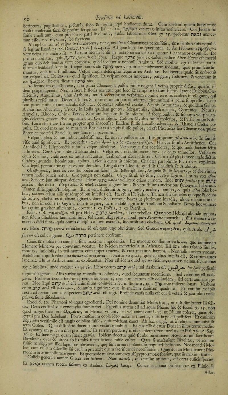 5° [?r<efatio ad Leclorein. Scriptura, pugillaribus, pictura, fuco &amp; tigillis, qui hodieque durat. Cum cera ad ignem liquefcentc multa conferunt facri &amp; profani fcriptores. Ef 41. 10. njfpVH eft ce ne inftar mollefcere. Cor Jacobi fic fuiffe emollitum, cum pro Efavo patri fe obtulit, Judaei fabulantur. Gen. 37. 2f. probatur nec ce¬ ram etfe, nec myxaria, fed ftyracem. Ab apibus itur ad vefpas feu crabrones, per quos Dens Chananxos percuffifte , &amp; e fedibus fuis pepulif- fe legitur Exod. 23.28. Deut.7.2.0. &amp; Jof. 2.4.12. Ad quae loca duo quaeruntur. 1. An Hcbrxum Htjira 'vere vefpa aut crabro fit. 2. Utrum litcrali fenili an metaphorico vefpx dicantur Chananxos expulifle. De primo dubitatur, quia npV tfiaraath eft lepra. Itaque njHif tjira ex eadem radice Aben-Ezrx eft morbi genus quo debilitantur vires corporis, quod fequuntur nonnulli Arabum. Sed morbus xgros detinet potius quam e fedibus fuis pellit. Itaque omnes alii rTJHV tjira vefpam aut crabronem reddunt, qux promifeue fu- muntur, quia funt fknillimx. Vefpx ampla deferiptio fequitur ex Arabibus. Et docetur quale fit crabronis aut vefpx mej. Et 0a<'tt£/v quid fgnificet. Et vefpam oculos impetere, pungere, fodicare, &amp; venenum in eos fpargere. Et cur dicatur ryHV tjira. Ad fecundam quxftionem, non pauci Chananeos pulfos fuiffe negant a vefpis proprie didlis, quia id fi¬ dem prope fuperat: Nec in facra hiftoria narratur quo loco &amp; tempore fidium fuerit. Itaque Eufebius Cx- farienfis, Auguftinus, unus Arabum, multi reCentiorum vefparum nomine terroris aculeos intelligunt, qui pluribus refelluntur. Docetur facros Scriptores multa obiter referre, circumflandis plane fuppreflis. Loca non pauca fuiffe ab animalculis defolata, degentes pulfasvel excifas. A ranis Autariatas, &amp;quofdamGallos. A muribus Abderitas, Troes, in Italia quafdam gentes, Megarenfes, Chalcidenfes, Gyarenfes. Neuris, Amyclis, Rhodo, Chio, Teno, Salamini ferpentes fuiffe infeflos. A fcorpionibus &amp; folpugis vel phalan- giis deletam gentem iEthiopicam citra Cynamolgos. Culices Myufiis fuiffe moleftos, ScPerfis prope Nifl- bin. Loca effe trans Iflrum propter apes inacceffa: Eafdem fuiffe Lucullo adverfas, &amp; Rhauciis Cretx po¬ pulis. Et quod maxime ad rem facit Phaielitas a vefpis fuiffe pulfos, id elE Phoenices feu Chananxos, qui ex Phoenice profedti Phafelidis montana occupaverunt. Vefpx apibus &amp; hominibus moleftiffimx. Earum in pullos amor. Illis proprium t» «p/mjcov. In fomnis vifx quid fignificent. Et proverbia o-cfitjjtwv pot &amp; trQw/xv tfetigetv. His cur fimilis Antifthenes. Cur Archilochi &amp; Hipponadlis tumulis vefpx infculptx. Vefpx qux fint acerbiores, &amp; quomodo faciant idlus lethiferos. Cur Cyprus olim ZQwu* didla. Vefpa ex crocodilo iracundior , ex equo arlimofior. Vefpx ex equis &amp; afinis, crabrones ex mulis nafcuntur. Crabronum idlus lethiferi. Crabro Grxce undedidlus. Crabro juvencis, hominibus, apibus, aviculis quam fit infeflus. Chaldxa paraphrafis Pf. joi.y. explicata. Cur lepra percutiatur qui proximo detrahit. Lingua tertia loqui, quid fit Chaldaeis &amp; Arabibus. Ofs-pnfilus, licet ex vetuftis poetarum fabulis de Bellerophonte, Ampelo &amp; Jo otrpoarAjyi celeberrimus, tamen hodie paucis notus. Ore pungit non cauda. Ofcfoe fit ab au fero, ut JisA fagitta. Latina vox afilus xvo Senecx jam ufurpari defierat. Hebr. t£TU nothas vellicare etiam carnem. Inde jatthus pro 8?in.P janthus afilus didlils. afilus &amp; juuwvj/ tabanus a graviffimis £c vetuftiffimis audloribus fynonyma habentur. Tamen diflinguit Philcfophus. Et re vera differunt origine, mole, aculeo, bombo, &amp; quia afilus folis bo¬ bus, tabanus etiam aliis quadrupedibus infeflus eft. Ita eft in Hefychio. Tamen alii camelos quoque Sc equos ab ceftro, chelydros a tabano agitari volunt. Sed uterque boves ut plurimum invadit, idque maxime in ili¬ bus, non in oculis b Aaybiy non b Aoydm, ut mendofe legitur in Apollonii Scholiafte. Boves hoc vulnere Ixfi quam graviter afficiantur, docetur 1. ex Poetis, 2. ex Patribus. Ezek. 2. 6. 7r«poifptj@*<« eft pro Hebr. DOID farabimy id eft rebelles. Qux vox Hebrqis aliunde ignota, non folum Chaldxis familiaris fuit, fed etiam zEgyptiis, apud quos Sarabaiu monachi aliis Renuit* a re¬ nuendo didii funt, quia omnis difciplinx jugo excufto, fuo arbitratu vivebant. Of. 4.16. Jd/xotAu irxpoisfi- cx> Hebr. nTID for er a refradtaria, id eft qux jugo obnititur. Sed Grxcis vapoiffura, quia Arab. farran eft culicis genus. Quo HVID pertinere creditum* Canis &amp; mufea duo animalia funt maxime impudentia. Ex utroque conflatum Mvo/xviot, qUO nomine in Homero Minerva per convitium vocatur. Et Nicion meretricula in Athenxo. Eft dc mufea tabano fimilis mordax, infidiofa, in teli morem cum impetu ruens, &amp; cuti maxime hxrens. Nonnulli canem vocant. Refelluntur qui feribunt >c ivol/xviuv Sc x oivo/xviav. Dicitur ■/.wcumx, quia canibus infefta eft, Se eorum aures lancinat. Hujus Arabica nomina explicantur. Non eft idem quod afiruv ricinus, quamvis ricinus fit canibus xque infeflus, unde vocatur Kwopaiw. Hebrxorum Dlrip arob, uni Arabum eft hurkous pediculi inguinalis genus. Aliis variorum animalium colluvies, quod fequuntur recentiores. Sed veteribus eft x.wo- fxvia. Probatur neque ferarum, neque ferpentum, neque mufearum effe colluviem , fed certi animalis ge¬ nus. Nec fequi arob effe animalium colluviem feu miflionem, quia anp arab mifcere fonat. Verbum enim ttrab eft ttoAvVjj/uov , Se multa fignificat qux in mufeam caninam quadrant. Et conflat ex ipfo textu ad certam animalis fpeciem arob reftringi. Proinde caufa nulla eft cur a veteri Sc jam olim rece¬ pta verlione difcedamus. Exod. 8. 20. Pharaoni ad aquas egredienti, Dei nomine denuntiat Mofes fore , ut ni fi dimitteret Praeli¬ tas, Deus craftina die cynomyias immitteret. Egreffus autem eft ad aquas Pharao hic Sc Exod. 7. iy. non quod magus fuerit aut ut Hebrxi volunt, fed vel animi caufa, vel ut Nilum coleret, quemzE- gyptii pro Deo habebant. Porro mufearum copia ideo maxime timetur, quia fxpe eft peltifera. Et caninam Aegyptiis verifimile eft magis odiofam fuifle, quia colebant canes. Ab hac plaga, ut a reliquis immunis fuit terra Gofen. Qux diftindtio docetur jure vocari mirabilis. Et cur effe dicatur Deus in illius terrx medio. Et cynomyiam gravem dici pro multa. Et terram perdere, id eft perdere terrx incolas, utPfal.78.4f. Sap. i<E 9- Et hxc plaga quam fuerit gravis. Ibidem docetur quid fit abominationem Aegyptiorum ficrificarc. Boveique, °yes 6c hircos ab iis mira fuperllitione fuiffe cultos. Quos f! madlaffent Ifraelitx, periculum tiulie nc vEgyptii illos lapidibus obruerent, que funt arma confueta in populari feditione. Nec mentiri Mo- Lm cum nullam difceffus fui cauflim prxtexit quam facrificandi neceffitatem. Queritur an Mofi licuerit Pha- 1 ac'nci.1.1 in os dnpoflurx arguere. Et quomodo mufex omnes ex zEgypto amotx fuerint, qux iis maxime fcatet. M IC1S Scner;de nomen Grxci non habent. Nam kuvu^ , quo paffim utuntur, eft certa culicis fpecies. Lt Purget nomen recens facium ex Arabico baudfa. Culicis encomia proferuntur ex Plinio &amp; A Ika-