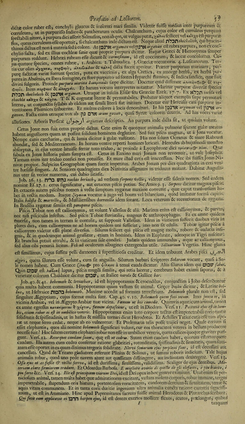 diftx color ruber eft> conchylii glaucus &amp; irafcenti mari fimilis. Videtur fuifle medius inter purpureum &amp; coeruleum, ut in purpuriffo Indico &amp; pantherarum oculis. Chalcanthum, cujus color eft coeruleus perquam fpe&amp;abili nitore, a purpura dici afferit Salmafius, non ab ere, ut vulgus putat, fcilicet vel *«fw eft purpura? flos quem coeruleum efle oportuit, fi chalcanthum inde didum eft. Neque aliud fV?3n thecheleth, qui hyacin¬ thinus didtus eft nona materia fed a colore. At|DJ*l&amp; argamara velpil&amp;t argavan eili ubra purpura, non ex con¬ chylio fafta, fed ex illius cochleae lanie quas proprie purpura dicitur. Itaque Graeci &amp; Hieronymus iemper purpuram reddunt. Hebraei rubram effe dicunt &amp; carmefmam, id eft coccineam, &amp; laccae concolorem. Cu- ms quatuor fpecies, omnes rubrae, i. Arabica. i.Talmudica. 3.Graeciae recentioris. q.Lufitanorum. Ter¬ tia cur olim Tro^uplf, cim&amp;aJiov &amp; *caAt>| di&amp;a fuerit aperitur. Praeter purpuram mannam , pur- pure fadtitiae variae fuerunt fpecies, puta ex vacciniis , ex alga Cretica, ex .amorge herba, ex herba 'pur¬ purea in Abafenis, ex Ibera ferrugine, ex flore purpureo ad fontes Hyparchi fluminis, &amp; IndiCa fandice, quae fuit divini fulgoris. Proinde purpuru marinti $ lowpiTuiws ixpc dicitui. Docctui cjind difFeiant #Ai7ropu£pp'@j cx 7ro(>— Item ?roS<pupffr&amp; dh^y^. Et harum vocum interpretes notantur. Marinae purpurae diverfas fpecies thecheleth argaman. Utraque in infulis Eliiae fcii Graecus Ezek. 2,7'1' Ex fcsVDH tachla vel thachla k«av» &amp; k«va»j. T &amp; IC cognatae literse &amp; permutabiles. Probatur aliquot exemplis llepe permutari literas ut comandis fyllabis ab eadem aut fimili litera fiat initium. Docetur cur Herculis cani purpurae in¬ ventionem Phoenices tribuerint. Et multos colores a locis denominari. In his fOjlK argnman vel ar- gavan. Fada enim utraque vox ab pj aram gavah^ quafi Syriae coioiem dixens. Ad has voces variae allufiones. Arboris Perficae argiavan deferiptio. An purpura inde dicta fit, ut quidam volunt. Cetus Jonae non fuit cetus proprie didus. Cete enim &amp; quotquot animalia pulmone fpirant gulae meatus habent anguftiores quam ut poflint folidum hominem deglutire. Sed luit pifcis magnus, ut a Jona vocatui. ^Netnpe canis carcharias, qui Sc lamia dicitur a gulas vaititate. His non folum Oceanus d. mare Ivubiunfi abundat, fed &amp;C Mediterraneum. In horum ventre reperti homines loricati. Hercules abhujufmodi monftro abforptus, in ejus ventre latuiffe fertur toto triduo, ac proinde a Lycophrone dici Tpjkrarep©- akm. Quae fabula ex Jonse hiftoria palam fumpta eft. Cetus in Euxino mari Jonam non revomuit , ut vult Jofephus. Tantum enim iter triduo confici non potuiffet. Et mare illud cetis eft inacceffum. Nec ibi luilfetjonas Ni¬ nivae propior. Sulpicius Geographiae quam fuerit imperitus. Arabes Jonam per dies quadraginta in ceti ven¬ tre haefifle fingunt. At Seniores quadraginta dies Ninivitis afiignatos in triduum mutant. Dubitat Aug-ulLi¬ nus uter fit verior numerus, cui dubio fatisfit. Job. 16. 13. mD mi nachhs benach, ad verbum f?rpens veSUs, videtur efle fideris nomen. Sed eodem nomine Ef 2.7.1. cetus fignificatur, aut cetaceus pifcis potius. SicAmosp.^. Serpens dicitur magnus pilcisl I’n cetaceis autem pifeibus nomen a vede fumptum zygaenae maxime convenit, quis caput tranfverfum ha¬ bet in vedis modum. Itaque ^vyouvoi vocatur a jugo vel boum vel bilancium, quod imitatur forma capitis. Italis balifta &amp; martello, &amp; Mallilienflbus barretella idem fonant. Loca veterum 6c recentiorum de zygama. In Brafilia zygaenae fimilis eft panapana pifcis. Pifcis Tobiae non eft callionymus, ut volunt Vallefius &amp; alii. Marinus enim eft callionymus, &amp; parvtis, nec nili pifciculis Infeftus. Sed pifcis Tobiae fluviatilis * magnus &amp; anthropophagus. Et ex amne quidem emerfit, non tamen in terram fe contulit, ut fupponit Vallefius. Idem in viaticum fuffecit duobus viris ni plures dies, cum callionymus ne ad horam quidem uni fufficiat, imo non fit edulis. 1 obiae igitur pifcis a callionymo videtur efle plane diverfus. Silurus fcilicet qui pifcis eft magne molis, robore &amp; audacia infi- gnis, &amp; in quodcunque animal graflatur, etiam in homines. Idem in Euphrate, adeoqueinTigri nafeitur; Et branchia potuit attrahi i &amp; in viaticum fale condiri. Judaeis quidem immundus , aeque ac callionymus , fed alius cibi penuria licitus. Fel ad oculorum albugines extergendas utile. Silluarium Vegetio. Hinc glanis eft fimillimus, cujus fuffitu pelli daemones a fuperftitiofis creditur. Et idem tribuunt Arabes pifei algiri , quem filurum efle volunt, cum fit anguilla. Silurum barbari feriptores Solarem vocant, quafi a So¬ le nomen habeat. Cum Graece (7a*p©- pro vj/ifopoff a tenui cauda dicatur. Aliis filurus idem qui £313^ fabot. Quin DDE? eft A«£p«£ lupus, pifcis mugili fimilis, qui retia lacerat, cerebrum habet eximii fapons, &amp; &amp; Varietate colorum Chaldaice dicitur £31352^ ? ut Italice varolo 6t Gallice bar. Job. 40. &amp; 41. behemoth &amp;c leviathan, id eft hippopotamus &amp; crocodilus, conjundlim a Jobo deferibuntuf quia multa habent communia. Hippopotamus quam vaftum fit animal. Grece 9-jjplov dicitur, 8cLatinebel- lua, ut Hebraice niDHD behemoth. Maxime accedit ad formam terreftriurn. JBehemoth plurale non eft, fed lingulare zEgyptium, cujus formae multa funt. Cap.40.v-10. Behemoth quem feci tecum. Imo juxta te, in vicinia Arabiae, vel in AEgypto Arabiae tuse vicina. Fcenum ut bos comedit. Quamvis aquaticum animal, tamen ex amne egreflus x«T«»£jwiTa< r x°$*ov > f^num depafeitur, ut eft in Diodoro. Verf. 11. Potentia ejus eft m lum¬ bis ^ etiam robur ei eft in umbilico ventris. Hippopotamus eniin toto corpore teStus eft impenetrabili corio tante foliditatis 8c fpiflitudinis, ut in haftas Scmiffilia tornari dicat Herodotus. Et Achilles Tatium cutis efle tam afpe- rse ut neque ferro cedat, neque ab eo vulneretur. Et Ptolemseus telis pofle trajici neget. Quale corium fi eflet elephantis j quos alii nomine behemoth fignificari volunt, cur eos thoracatos veteres in bellum producere necefle fuit ? Hoc faltem certum elephanti robur non efle in umbilico ventris, quem culices quoque graviter puri- gunt. Verf. iz. Retorquet caudam fuam, quq eft ut cedrus. Suum enim caudam habet, quorum eft retorquere caudam. Illa autem cum cedro confertur ratione glabritiei, rotunditatis, fpiftitudinis &amp; firmitatis, quamfum- mam efle oportet in ea quam diximus tergoris foliditate. Nervi femorum ejus perplexi funt, id eft decuftati aut cancellati. Quod de Tritano gladiatore referunt Plinius 6c Solinus, ut fummi roboris indicium. Tale hujus animalis robur, quod uno pede navem ajunt aut quaflatam diffringere, aut inclinatam demergere. Verf. 13. Offa ejus ut as fufile &amp; vettis ferrea, id eft duriflima^ firmiflima, validiflima. Scaliger de ejus dentibus. Ma¬ teriam ebore firmiorem tradunt. Et Odoardus Barhofa. E migliofe avorio di que lio degis elefantt, e piu bianco, e piu, forte &amp;c. Verf. 14. Ille eft principium viarum Def id eft Dei opus in hoc genere eximium.1 Utut enim fit per- niciofum animal, tamen multa habet quae admirationem excitant, vaftam molem corporis, robur immane, tergus impenetrabile j ftupendum oris hiatum, portentofam voracitatem, candorem dentium &amp; firmitatem, terrae Se aquis vitam communem. Et in tanta corii duritie ingenium ultra animalia cundta ratione carentia fagacifli- mum, ut eft in Ammiano. Hinc apud Papremitanos facrum fuifle animal Herodotus &amp; Plutarchus feribunt.' Qui fecit eum applicavit ei l“nn harpen ejusi id eft dentes exertos molliter flexos, acutos, praelongo^, quibus / tanquarri
