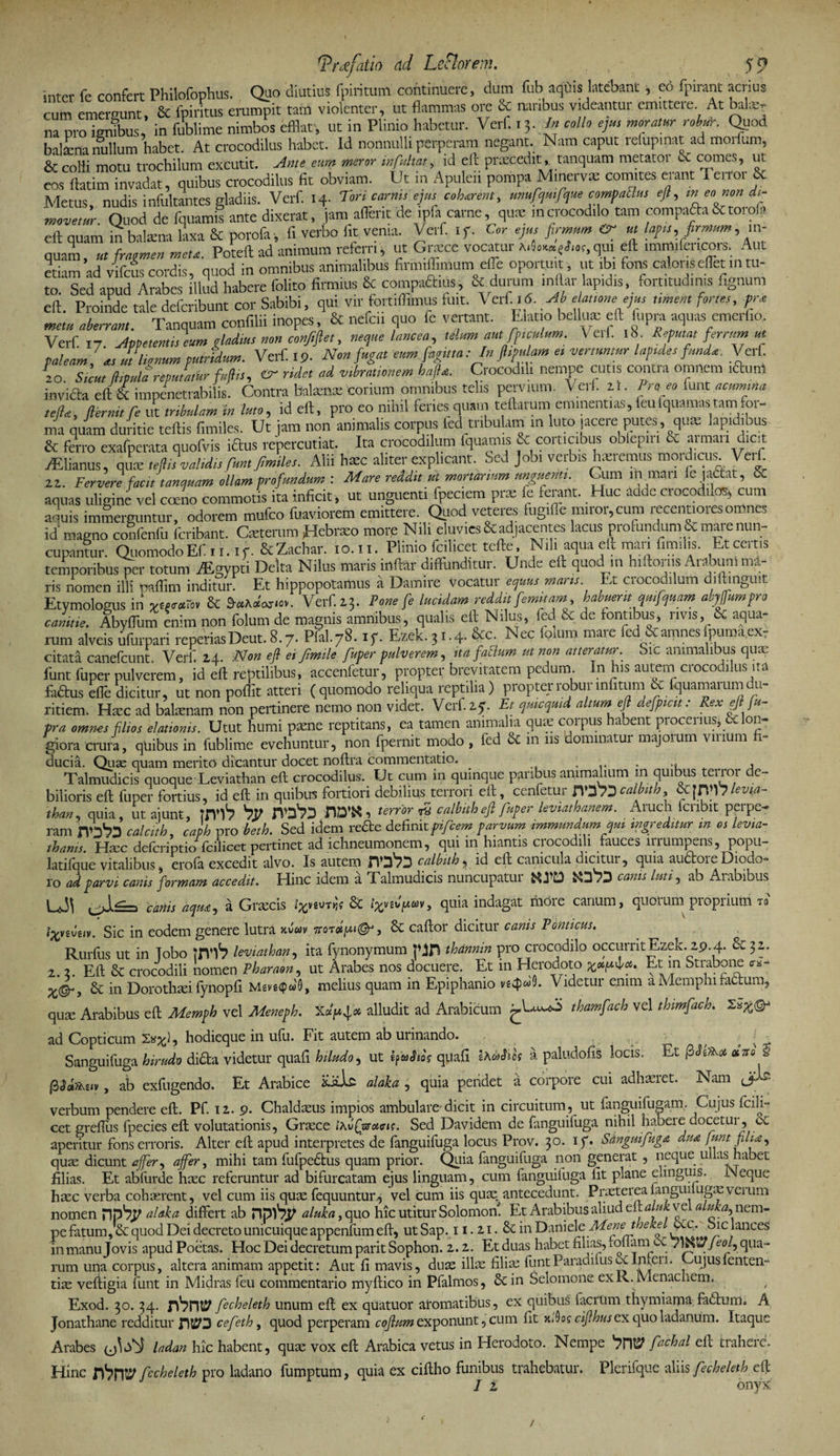 inrcr fe confert Philofophus. Quo diutius fpiritum continuere, dum fub aqOis latebant, eo fpirant acrius cum emergunt. &amp; fpiritus erumpit tam violenter, ut flammas ore &amp; naribus videantur emittere. At bala> na pro igmbus, in fublime nimbos efflat, ut in Plinio habetur. Verf r 3. Ia collo ejm moratur robur. Quod hnl£m nullum habet. At crocodilus habet. Id nonnulli perperam negant. Nam caput refupinat ad morfum, &amp; colli motu trochilum excutit. Ani e eum meror infultat, id eft praecedit» tanquam metator &amp; comes, ut eos ftatim invadat, quibus crocodilus fit obviam. Ut in Apulen pompa Minervae comites erant Terror &amp; Metus, nudis infultantes gladiis. Verf. 14- Tori carms ejus cobarent, tmufiqmfque compaltus eft, m eo non di¬ movetur. Quod de fquamis ante dixerat, jam aflerit de ipfa carne, qux mcrocodilo tam compadta&amp;torofa eft quam in balaena laxa &amp; porofa, fi verbo fit venia. Verf. If. Cor ejus firmum <r m lapis, firmum, in¬ quam, ut fragmen metu. Poteft ad animum referri j ut Grace vocatur qui eft immifertpors. Aut etiam ad vifcus cordis, quod in omnibus animalibus firmiffimum effle oportuit , ut ibi fons calens efflet m tu- m Sed anud Arabes illud habere folito firmius &amp; compadius, &amp; durum inflar lapidis, fortitudinis fignum S. ptKrdrf^ntcorSabibi, qui vir fortiffimus fuit. Verf,6. A eia,tone ejus ument fortes, fr* metu aberrant. Tanquam confilii inopes, &amp; nefeu quo fc vertant. Elatio bellutc eft fupra aquas cmerl.o Verf 17. Appetentis eum gladius non confifiet, neque lancea, telum aut fp,culum. V eif ib Refuta, ferrum ut Valeam, as Itlinum fumidum. Verf ip. Non fugat eum fagina :In ft.pulam et vertuntur lap,des funda. Veri. \o Sicut ftivula reputatur fuftis, ridet ad v.bramnem hafta. Crocodili nempe cutis contra omnem iftum invidia eft &amp; impenetrabilis. Contra balamte corium omnibus telis pervium. Verf 11. Pro eo funt acum,.rta te fla, fternit fe ut tribulam in luto, id eft, pro eo nihil feries quam telbrum eminentias, feufquamas tam for¬ ma quam duritie teftis fimiles. Ut jam non animalis corpus fed tribulam m luto jacere putes, qua: lapidibus &amp; ferro exafperata quofvis ite repercutiat. Ita crocodilum fquamis &amp; corticibus obfepin &amp; armari dicit lElianus, qux ,eftU validi. fiunt ftmiles. Alii h*c aliter explicant. Sed job. verbis lucremus mordicus. Verf 22. Fervere facit tanquam ollam profundum : Mare reddit m mortarium unguenti. Cum in mati ie jactat, SC aquas uligine vel cceno commotis ita inficit, ut unguenti fpec em prae fe ferant. Huc acide crocodilos, cum aquis immerguntur, odorem mufeo fuaviorem emittere. Quod veteres fugiffe miror,cum recennoresomnes id magno confenfu fc,ibant. Creterum Hebraeo more Nili eluvies ^adjacentes lacus profundum &amp; mare nun¬ cupamur. QuomodoEf 11.1 f. &amp;Zachar. 10.It. Plinio fcilicet tcfte Nil. aqua eft man fimilis. Et ortis temporibus per totum /Egypti Delta Nilus maris inftar diffunditur. Unde eft quod m hiftoriis Arabum ma- ris nomen illi mftlm inditur. Et hippopotamus a Damire Vocatur equus maris Et ciocodilum diltinguit Etymologiis in yueum Sc Wcw.o». Verf 13. Pone fe lucidam reddtt femitam, babuern qmfqmrn abyfumpro canitie. Abyffum enim non folum de magnis amnibus, qualis eft Nilus, fed &amp; de fontibus, rivis, &amp; aqua¬ rum alveis ufurpari reperiasDeut.8.7. Pfal.78. if. Ezek. 31.4. 8cc. Nec folum mare fed&amp; amnes fpuraaex, citata canefcunt. Verf zl. Non eft eif mile fuper pulverem, tinfaRum M non atteratur Sic animalibus qua. funt fuper pulverem, id eft reptilibus, accenfetur, propter brevitatem pedum. In his autem crocodilus ita fa&amp;is effe dicitur, ut non poffit atteri (quomodo reliqua reptilia) propter robur infitum &amp; Jquamarum du¬ ritiem. Haec ad balaenam non pertinere nemo non videt. Verf 2. f. Et qmcqmd altum eft defptcu. Rex eft fu¬ pra omnes filios elatioms. Utut humi paene reptitans, ea tamen animalia qua; corpus habent procerius, celon- giora crura, qUibus in fublime evehuntur, non fpernit modo , fed &amp; m ns dominatur majorum vinum - ducia. Quas quam merito dicantur docet noftra commentatio. ; ... . A Talmudicis quoque Leviathan eft crocodilus. Ut cum in quinque paribus animalium in quibus terror de¬ bilioris eft fuper fortius, id eft in quibus fortiori debilius tcnoii eft, cenfetui HD7Dw lt > eJia than, quia, ut aiunt, tfvV? b? flD’« , terror calbith ejl fuper leviathanem. Aruch icnbit perpe¬ ram calcith, caph pro beth. Sed idem reae definitparvum immundum qm ingreditur m os levia-- thanis. Haic deferiptio fcilicet pertinet ad ichneumonem, qui in hiantis crocodili fauces irrumpens, popu- latilque vitalibus, erofa excedit alvo. Is autem calbith, id eft canicula dicitur, quia auctoie Diodo- ro ad parvi canis formam accedit. Hinc idem a Talmudicis nuncupatui canis luti, ab Aiabibus canis aqua, a Graecis quia indagat more canum, quorum proprium rf i%viveiv. Sic in eodem genere lutra kvuv , Sc caftor dicitur canis Panticus. Rurfus ut in jobo m*}*? leviathan, ita fynonymum pH thdnnin pro crocodilo occurrit Ezek. 29.4. &amp; 32. 2.2. Eft &amp; crocodili nomen Pharaon, ut Arabes nos docuere. Et in Herodoto Et m Strabone <rs- xQr-, &amp; in Dorothaei fynopfi Msv«<pcJ0, melius quam in Epiphanio Videtur enim a Memphi factum, quge Arabibus eft Memph vel Meneph. xdpfot alludit ad Arabicum thamfach vel thimfack ad Copticum 2^1, hodieque in ufu. Fit autem ab urinando. ,, 4 / [ . Sanguifuga hirudo dida videtur quafi hiludo, ut ipvJioV quali I\6)Sios a paludofis locis. Et emo j (ZMkw , ab exfugendo. Et Arabice Judft alaka , quia pendet a corpore cui adhaeret. Nam Jte verbum pendere eft. Pf. 12. 9. Chaldaeus impios ambulare-dicit in circuitum, ut fanguifugam. Cujus fcili¬ cet greftus fpecies eft volutationis, Graece iKvfgsctctt. Sed Davidem de fanguifuga nihil habere docetui, ce aperitur fons erroris. Alter eft apud interpretes de fanguifuga locus Prov. 30. if. Sanguifuga du<&amp; funt filia, quae dicunt affer^ affer, mihi tam fufpetbus quam prior. Quia fanguifuga non generat, neque ullas habet filias. Et abfurde haec referuntur ad bifurcatam ejus linguam, cum fanguifuga ftt plane elinguis. Neque haec verba cohaerent, vel cum iis quae fequuntur., vel cum iis quae antecedunt. Praeterealanguiiugmverum nomen npV alaka differt ab aluka, quo hic utitur Solomon! Et Arabibus aliud dtaluk vel.aluka, nem¬ pe fatum, &amp; quod Dei decreto unicuique appenfum eft, ut Sap. 11.21. &amp; in Daniele Menet je e oie. bic lances 'in manu Jovis apud Poetas. Hoc Dei decretum parit Sophon. 2.2. Etduas habet filias, foffam oCyWWftofiqua¬ rum una corpus, altera animam appetit: Aut fi mavis, duas illae filiae funtParadifus&amp;Inferi* Gujusfenten- tiae vefiigia funt in Midras feu commentario myftico in Pfalmos, 6cin Selomone ex R. Menae iem, Exod. 30. 34. rV?niy fecheleth unum eft ex quatuor aromatibus, ex quibus lacrlim thymiama fadum- A Jonathane redditur cefeth, quod perperam coflum exponunt, cum fit nAos ciflbus ex quo ladanum. Itaque Arabes ladan hic habent, quae vox eft Arabica vetus in Herodoto. Nempe fachal eft trahere. Hinc n^n*^ fecheleth pro ladano fumptum, quia ex ciftho funibus trahebatur. Plerifque aliis fecheleth efl: /2 onyx