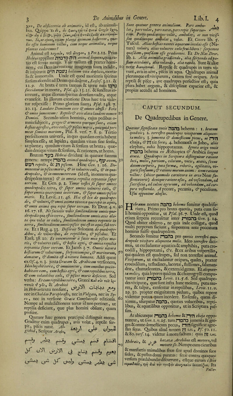 3 De Jnhnmbus in Genera. Lib. I. Xuv j De abftinentia ab animatis , id eft, ab animali¬ bus. Quippe ’£< , cos (pcccri)’'!jy rcc $vt<x ^'JxY‘v ££e,> clppr elv\ o (31&amp;, [AyTt ^coaVjfAtiTt Qvtuv yfAwv «7roTiy.v(tV- Tiov. Si, ut ajunt, etiam planta animam haberent, qua¬ lis ejfet hominum viblus, cum neque animalia , neque plantas caderemus ? Animal eft \oyixbv, vel dhoyov, i Pet.z.n. Prius Hebraiappellant rPDIO iTJl animal loquens,quiara- tio eft fermo mentis. Tale nullum eft praeter homi¬ nem , cui Deus in creatione imaginem luam indidit, &amp; infpiravit 0*TI DDt^J! halitum vita duplicis, morta¬ lis &amp; immortalis. Unde eft quod morientis fpiritus furfumafcenditad Deum qui dederat,Ecclef. 3.2.1. &amp; I2.p. At bruta e terra tantum &amp; terrae nata fucciduntur in morte, Pfal. 49. 13.21. £t funditus in¬ tereunt, atque illorum fpiritus deorliim vadit, atque cvanefcit. In illomm creatione Deus hasc tria vide¬ tur refpexifte : Primo gloriam fuam, Pfal. 148. 7. IO. 13. Laudate Dominum cete &amp; omnes abyffi: Fera &amp; omne jumentum : Reptile &amp; avis alata laudent nomen Domini. Secundo ufum hominis, cujus pedibus o- mnialiib jecit, greges &amp; armenta quotquotfunt, etiam heftias agrefles, aves coeli, &amp;pifces maris, quicquidper¬ meat femit as marium, Pfal. 8. verf. 7. 8. 9. Tertio perfectionem univerfi, in quo quaedam entia habent ftmplex efle, ut lapides , quaedam vitam fine fenfu, ut plantae j quasdam vitam cxfcnfum ut bruta; quae¬ dam denique vitam 8c fenfum, &amp;c rationem, ut homo. Brutum Hebrai dividunt in quatuor fumma genera: nempe riDH!! animal quadrupes, £]ip avem, reptile, &amp; J7 pifcem. Hinc Gen. 1. 26. Do- minentur inpifces maris , &amp; in volucres coeli, &amp; in qua¬ drupedes, &amp; in omnem terram (id eft, in omnem qua¬ drupedem terrae) &amp; in omnia reptilia reptantia fuper terram. Et Gen. p. 2. Timor vejlri fit fuper omnes quadrupedes terret, &amp; fuper omnes volucres coeli, &amp; fuper omnia qua repunt in te-rram, &amp; fuper omnes pifces maris. Et Levit. .11.46. Hac eft lex de quadrupe¬ de, &amp; volucri, &amp; omni anima vivente qua repit in aquis, &amp; omni anima qua repit fuper terram. Et Deut. 4. V. 1(5. 17. 18. Ne faciatis vobis fmilitudinem omnis qua¬ drupedis qua eft m terra , fmilitudinem omnis avis ala¬ ta qua volat in coelis, fmilitudinem omnis repentis in terra, fmilitudinem omnispifeis qui eft in aquisfub ter¬ ra. Et I Reg.4. 33. Dif eruit Solomon de quadrupe¬ dibus, de volucribus, de reptilibus, &amp;pifcibus. Et Ezek. 38. 20. Et concutientur d facie mea pifces ma¬ ris , &amp; volucres coeli, &amp; beftia agri, &amp; omnia reptilia reptantia fuper terram. Etjacob. 3.7. Omnis natura beftiarum &amp; volucrium, ferpentiumque, &amp; marinorum, domatur, &amp; domita eft d natur a humana. Addi queat ex Of. 4. v. 3. juxta Graeam &amp; Arabicam verfionem, Jdeo lugebit terra, &amp; imminuetur, cum omnibus qua in¬ habitant eam, cum beftiis agri, &amp; cum reptilibus terra, &amp; cum volatilibus coeli, &amp; pifces maris deficient. Sed verba: Et cum reptilibus terra, Graece <riv t q~$ TrgTotf F yijc, &amp; Arabice . qi . , inHebraotextu nonliint, ^ nec in Chaldao Paraphrafte, nec in Vulgato, nec in Sy¬ ro , nec in verfione Graea Complutenfs editionis. Nempe ad maledidtionem terrae id non pertinet, ut reptilia deficiant, quae plus homini obfunt, quam profunt. Quatuor haec genera praecipue diftinguit motus. Graditur enim quadrupes , avis volat., reptile fer- pit, pifeis natat. AI- \ \ t \\ g‘ab,d. Scriptor Arabs, A Ui*4, • • k y +iJj A^~ c>“ y Aj tAi A?- A IO 20 3° 4° p 60 70 Sunt quatuor genera animalium. Pars ambu- » lat, pars volat, pars natat,pars repit fuper ter- ram. Porro quodcunque volat, ambulatat non vicif- fm quodcunque ambulat , volat. Et Cicero lib. y. Tufcul. Alias beftias nantes aquarum incolas effe (Na¬ tura) voluit j alias volucres coelo frui libero : ferpentes quafdam,quafdam effe gradientes. Et DeNat.Deor. lib. 2. Alia animalia gradiendo , alia ferpendo adpa- ftum accedunt, aliavolando, alia nando. Sunt &amp; aliae notae Sia^nixoti. Reptile &amp; quadrupes in terra vi¬ vunt, avis in aere, pifeis in aqua. Quadrupes animal plerumque eft viviparum, caetera fere ovipara. Avis reptili pifce , ave quadrupes perfectior eft 5 quia plura habet organa, &amp; difciplinae capacior eft, Lz propius accedit ad hominem. CAPUT SECUNDUM. De Quadrupedibus in Genere. Quatuor fgnificat a vocis riDtlS behema : 1. brutum quodvis j 2. terreftre quadrupes viviparum aliquan¬ ta molis-, ^.jumenta &amp; domefticumpecus, ut 71*11 chaja, Pfziz/mzj 4. behemoth m Jobo, aliis elephas, nobis hippopotamus. Ignota origo vocis naH3 behema ex zEthiopica &amp; Arabica lingua eruta. Quadrupes in Scriptura diftinguitur ratione loci, molis,partium, colorum, vocis, atatis, fexus dotum corporis, puta forma, roboris, agilitatis, vi¬ goris fenfuum j &amp; ratione morum animi : item ratione vilius : {obiter quomodo carnivora in arca Nox fu- ftentaverit) denique ratione ufus , ad vefcendum, ad facrificia, ad cultus agrorum , ad vehendum, ad cor¬ pora veftienda. A pecore, pecunia, d peculium. Ufui opponitur abufus. HebrMm nomen HDHa behema fumitur quadrifa* riam 5 Primo pro bruto quovis, puta cum fo- li homini opponitur, ut Pfal. 3 <5. 7. Unde eft, quod etiam ferpens recenfetur inter fniDHa Gen. 3. 14. Quod obiter obfervo , ne quis inde colligat, quod multi perperam faciunt , ferpentem ante peccatum hominis fuifte quadrupedem. Secundo fumitur riDHa pro quovis terreftri qua¬ drupede viviparo aliquanta molis. Ideo terreftre dici¬ mus, ut excludantur aquatica 6c amphibia, puta cro¬ codili, hippopotami, &amp;c. &amp; ex avibus vefpertilio, qui quidem eft quadrupes, fed non terreftre animaL Viviparum, ut excludantur ovipara, quales, preeter crocodilum, teftudines, lacertae, ftelliones, falaman- dras, chamaeleontes, &amp; caetera id genus. Et aliquan¬ ta molis j quia lepores quidem &amp; choerogrylli compu¬ tantur inter mana Levit. 11. y. 6. Sed quadrupe¬ des viviparae, quae funt infra hanc molem, puta mu¬ res, &amp; talpae, cenfentur in reptilibus, Levit, n.v. 29. 30. propter exiguitatem pedum, quibus repere videntur potius quam incedere. Eo fenfu, quem di¬ ximus, ufurpaturplDna? quoties volucribus, repti¬ libus, &amp; aquatilibus opponitur, ut in Scriptura pafi fim. At ubicunque }“|Qna behema &amp; fvn chaja oppo¬ nuntur , ut Gen. 1. v. 2y. tum nana jumenta &amp; gre¬ ges Sc omne domefticum pecus, PTn fignificat agre- ftes feras. Quibus aliud nomen p? zdx,, Pfyo.11. UsAlo.verf 14. videtur a motu fadtum: quia zjtz, Hebrais Sc • -ds baz^az,a Arabibus eft movere, vel TA movere fe. Nempe cum cicuribus &amp; manfuetis animalibus fixas fint apud dominos fuos ledes, &amp; paftus domi paratus: ferae contra quoquo- verfum praedabundas difeurrunt, eftque earum 0/3ics VQfAxJlKOS , vfj Sud TtjV dl>ityXX70V SXT 07ti£iiv. Ita Fulle-