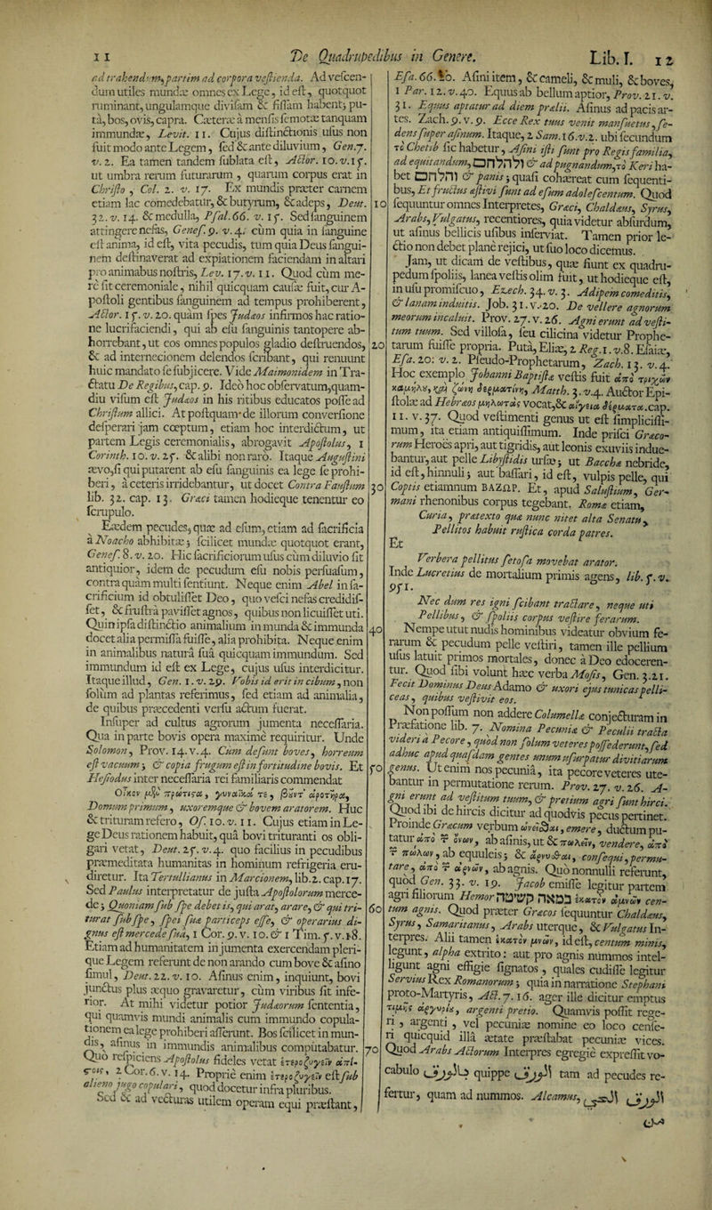 11 Ci d trahend ' w, partim ad corpora veflienda. Ad vefcen- dum utiles munda; omnes ex Lege, id eft, quotquot luminant, ungulamque divifam &amp; fidam habent} pu¬ ta, bos, ovis, capra. Caeterse a menfis femotae tanquam immundae, Levit, n. Cujus diftindtionis ulus non fuit modo ante Legem, fed&amp; ante diluvium, Gen.j. v. z. Ea tamen tandem fublata eft, Affor. lo.v.iy. ut umbra rerum futurarum , quarum corpus erat in Chriflo, Coi. z. v. 17. Ex mundis praeter camem etiam lac comedebatur, &amp; butyrum, &amp; adeps, Dem. 3z.v. 14. &amp;medulla, Pfal.66. v. 17. Sedfanguinem attingere nefas, Genefp. v. 4, cum quia in fanguine clf anima, id eff, vita pecudis, tum quia Deus fangui- nem deftinaverat ad expiationem faciendam in altari pro animabus noftris, Ley. ij.v. 11. Quod cum me¬ re fit ceremoniale, nihil quicquam caufae fuit, cur A- poftoli gentibus fanguinem ad tempus prohiberent, Affor. 1 f. v. 20. quam lues Judaos infirmos hac ratio¬ ne lucrifaciendi, qui ab efii fanguinis tantopere ab¬ horrebant, ut eos omnes populos gladio definiendos, 6e ad internecionem delendos fcribant, qui renuunt huic mandato fe fubjicere. Vide Aiaimonidem in Tra- diatu De Regibus, cap. 9. Ideo hoc obfervatum,quam- diu vifum eft Judaos in his ritibus educatos poffe ad Chriftum allici. At poiiquanr de illorum converfione defperari jam coeptum, etiam hoc interdiCtum, ut partem Legis ceremonialis, abrogavit Apoftolus, 1 Cormth. lo.v.zy. &amp; alibi non raro. Itaque Auguflini revo/i qui putarent ab efu fanguinis ea lege fe prohi¬ beri, a ceteris irridebantur, ut docet Contra Fauflum lib. 32. cap. 13. Graci tamen hodieque tenentur eo fcrupulo. Eiedem pecudes, quae ad efum, etiam ad facrificia a AToacho abhibitae) fcilicet mundae quotquot erant, Genef. 8. v. 20. Hic lanificiorum ulus cum diluvio fit antiquior, idem de pecudum efu nobis perfuafum, contra quam multi fentiunt. Neque enim Abel infa- crificium id obtuliflet Deo, quo vefei nefas credidif- fet &amp; fruftra pavifiet agnos, quibus non licuiffet uti. Quin ipfa diftmdtio animalium in munda &amp; immunda docet alia permiffa fuiffe, alia prohibita. Neque enim in animalibus natura fua quicquam immundum. Sed immundum id eft ex Lege, cujus ufus interdicitur. Itaque illud, Gen. 1. v. 2p. Dibis id erit in cibum, non folum ad plantas referimus, fed etiam ad animalia, de quibus praecedenti verfu actum fuerat. Infuper ad cultus agrorum jumenta necefiaria. Qua in parte bovis opera maxime requiritur. Unde Solomon, Prov. 14* V.4. Cum de funt boves, horreum efl vacuum 5 &amp; copia frugum efl in fortitudine bovis. Et Heflodus inter necefiaria rei familiaris commendat O/jcov fdjo TrpuTica, yvmVad rs, /3At’ «pori^as, Domum primum, uxoremque &amp; bovem aratorem. Huc &amp; trituram refero, Of.io.v.n. Cujus etiam in Le- ge Deus rationem habuit, qua bovi trituranti os obli¬ gari vetat, Deut.zy.v.^. quo facilius in pecudibus praemeditata humanitas in hominum refrigeria, eru¬ diretur. Ita 'Tertullianus in Aiarcionem, lib.2. cap. 17. Sed Paulus interpretatur de jufta Apoflolorum merce- de} Quoniam fub fpe debet is, qui arat, arare, &amp; qui tri¬ turat fubfpe, fpei fua particeps ejfe, &amp; operarius di¬ gnus efl mer cede fua, i Cor. p. v. io. &amp; 1 Tim. <p. v.t-8. Etiam ad humanitatem in jumenta exercendam pleri- que Legem referunt de non arando cum bove &amp; afino fimul, Deut.zz.v. 10. Afinus enim, inquiunt, bovi junctus plus aequo gravaretur, cum viribus fit infe¬ rior. At mihi videtur potior Judaorum fententia, qui quamvis mundi animalis cum immundo copula¬ tionem ea lege prohiberi allerunt. Bos fcilicet in mun- is, afinm in immundis animalibus computabatur. Quo 1 clpiciens Apoftolus fideles vetat zrzoofyuv duU . 1°r-6.v. 14. Proprie enim Itzaofyzrv eikfub a'TJT T‘T ’ Suod docetur infra pluribus. 'K ; ^cHiras utilem operam equi prxitant, IO 20 3° Ta Quadrupedibus in Genere. Lib. [. jz Efa.66. Vo. Afini item, &amp; cameli, &amp; muli, &amp; boves, 1 Par. 12. V. 40. Equus ab bellum aptior, Prov. zi.v. 31. Equus aptatur ad diem pralii. Afinus ad pacis ar- tes- Zach.p. v.p. Ecce Rex tuus venit manfuetus ,fe- densfuper aflnum. Itaque, 2 Sam. 16.v.z. ubi fecundum TC'Cheuh habetur, Afmi iJH funt pro Regis familia, ad equitandum, Dn'?n'?l &amp; ad pugnandum,to Keri ha¬ bet Qi 1 /DI &amp; pams} quafi cohasreat cum fequenti- bus. Et fruffus aflivi funt ad efum adolefcentum. Quod fequuntur omnes Interpretes, Graci, Chaldaus, Syrus, Arabs, Vulgatus, recentiores, quia videtur abfurdum, ut afinus bellicis ufibus inferviat. Tamen prior le¬ ctio non debet plane rejici, ut fuo loco dicemus. Jam, ut dicam de veftibus, quae fiunt ex quadru¬ pedum fpoliis, lanea veftisolim fuit, ut hodieque efl, in ufu piomifcuo, Ez.ech. 34- “V. 3 • Adipem comeditis, D lanam induitis. Job. 31 • V.'20. De vellere aenorum meorum incaluit. Prov. 27. v. 26. Agni erunt advefli- tum tuum. Sed villofa, feu cilicina videtur Prophe¬ tarum fuiffe propria. Puta,Elice,2Reg.i.v.8.Efaim, Efa. zo: v.z. Pleudo-Prophetarum, Zach.ix.v.A Hoc exemplo J oh anni B apti fla veftis fuit M xau^A*, nf rbr,, Matth. 3. v.4. Au&amp;or Epi- ffola; ad Hebraoswkurdg vocat,&amp; Ayu* ^usiros.cap. li.v. 37. Quod veftimenti genus ut eft fimpliciffi- mum, ita etiam antiquiffimum. Inde prifei Graco- rum Heroes apri, aut tigridis, aut leonis exuviis indue- bantui, aut pelle Libyfltidis urfio} ut Baccha nebride, id eft,himiulij aut baffari, id eft, vulpis pelle, qui Coptis etiamnum BAZiiP. Et, apud Saluftium, Ger¬ mani rhenonibus corpus tegebant. Roma etiam, Curia, pratexto qua nunc nitet alta Senatu, P ellitos habuit ruflica corda patres. Et Ter b era pellitus fetofa movebat arator. Inde Lucretius de mortalium primis agens, Pfi. Nec dum res igni fcibant traffar e, neque uti Pellimus, (S fpoliis corpus v efl ire ferarum. Nempe utut nudis hominibus videatur obvium fe- raium &amp; pecudum pelle veftiri, tamen ille pellium u us Ltuu primos mortales, donec a Deo edoceren¬ tur. Quod ftbi volunt hxc verbaMofs, Gen. 3.21. Fecit Dombms Deus Kdamo uxori eius tunicas pelli¬ ceas , quibus veflivit eos. 1 Nonpoffum non addere Columella conjecturam in 1 raefatione lib. 7. Nomina Pecunia &amp; Peculii traffa videri a Pecore, quod non folum veteres poffe derunt, fed adhuc apud quafdam gentes unum ufurpatur divitiarum genus. Ut emm nos pecunia, ita pecore veteres ute- baiTtui m peimutatione rerum. Prov. 27. v. 26. A- gni erunt ad v efl itum tuum, &amp; pretium agri funt hirci. Quod ibi dc hircis dicitur ad quodvis pecus pertinet. 1 romdeGracum verbumemere, dubtumpu- taturaVo t ovav, abafinis,ut &amp;7ra\£vf vendere, «Va r vruiAm, ab equuleis3 &amp; 9-«i, confequi,permu¬ tare diro v dcAv, abagnis. Quo nonnulli referunt, ^110 ,33* v- *9- Jacob emiffe legitur partem agri filiorum HemorXWJ^ HXDD dLfxid* cen¬ tum agnis. Quod praeter Gracos fequuntur Chaldaus, Syrus, Samaritanus, Arabs uterque, &amp;TulgamsIn¬ tel pies. Alii tamen iY.cnov yvuv, id eft, centum minis, leguiiL, alpha extrito: aut pro agnis nummos intel- ligunt agni effigie fignatos , quales cudifle legitur Servius Rex Romanorum} quia in naiTatione Stephani proto-Maityris, Aff. 7.16. ager ille dicitur emptus rfy‘f a%yv?ff, argenti pretio. Quamvis poffit rege¬ ri , argenti , vel pecunia nomine eo loco ceiife- ri quicquid illa mtate proflabat pecuniae vices. Quod Arabs Afforum Interpres egregie expreffit vo¬ cabulo quippe tam ad pecudes re- lib. j*. v. 40 r° 60 70 fertur, quam ad nummos. AI camus,