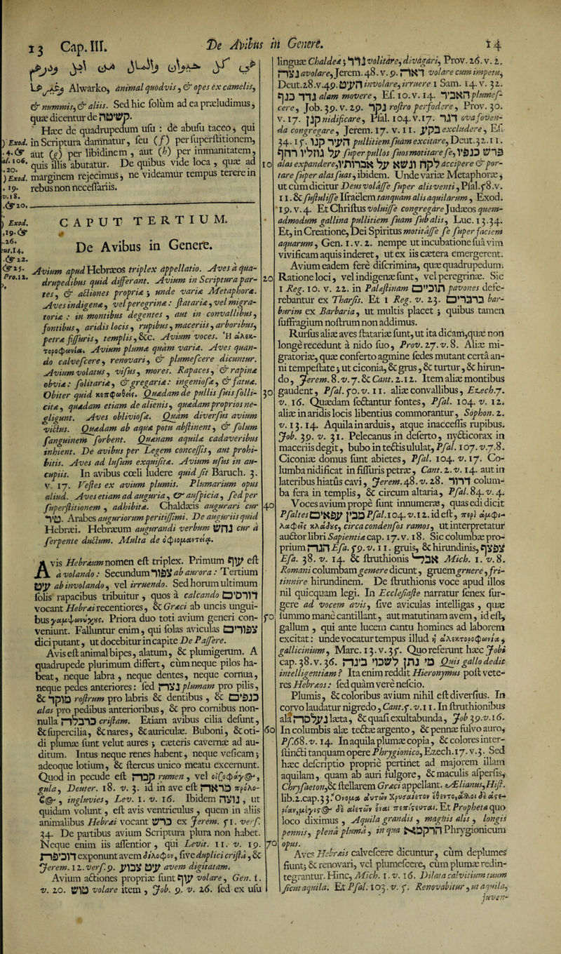 ) Exod. • 4.<!r a/. I o6, .20. ) Exod. 19. H.18. ) Exod. ,19- L.26. ut.l 4, .<^•22. <^25. Z’ro.12. £ 13 Cap. III. ^ C5 L^aS^ Alwarko, animal quodvis, ek opes ex camelis, nummis, &amp; aliis. Sed hic foliim ad ea proludimus, quo dicentur de HCD^p* ' Hoc de quadrupedum ufu : de abufu taceo * qui inScriptura damnatur, feu (/) per fuperftitionem, aut (y) per libidinem 5 aut (hi) pei immanitatem , quis illis abutatur. De quibus vide loca , quo ad marginem rejecimus, ne videamur tempus tererem rebus non neceffariis. De Avilus in Genere* 10 3° 40 CAPUT TERTIUM, # > > De Avibus ia Genere. Avium apud Hebroos triplex appellatio. Aves d qua¬ drupedibus quid differant. Avium in Scriptura par- 20 tesj &amp; aUiones propria j unde vari a Metaphora. Aves indigena, vel peregrina: jiat ama, vel migra- toria : in montibus degentes , aut m convallibus, fontibus , aridis locis , rupibus, maceriis , arboribus, petra fiffuris, templis,&amp;c. Avium voces. 'H «Aw- Topo$«vf«* Avium pluma quam varia. Aves quan¬ do calvefcere, renovari, plumefcere dicuntur. Avium volatus, viftts, Rapaces, &amp; rapina obvia: folitoria, &amp; gregaria: ingeniofa, &amp; fatua. Obiter quid MnQooQeis. Quadam de pullis fuisfolli- cita, quadam etiam de alienis, quadam proprios ne- gligunt. Aves obliviofa. Quam diverfus avium viblus. Quadam ab aqua potu abflinent, d* /i?/;*?» fanguinem [orbent. Quanam aquila cadaveribus inhient. De avibus per Legem conceffis, prohi¬ bitis. Aves ad lufum exquifita. Avium ufus in au¬ cupiis. In avibus coeli ludere quid Jit Baruch. 3. V. 17. avium plumis. Plumarium opus aliud. Aves etiam ad auguria, £?- aufpicia , fed per fuperftitionem , adhibita. Chaldois augurari cur *V£3- Arabes auguriorumperitiffimi. De auguriis quid Hebroi. Hebroum augurandi verbum C14r a ferpente dubium. Adulta de ocpiopiotnelq. Avis Hebraum nomen eft triplex. Primum eft a volando: Secundum ab aurora : Tertium ab involando, vel irruendo. Sed horum ultimum folis rapacibus tribuitur , quos a calcando 01)1 vocant Hebrai recentiores, &amp; Graci ab uncis ungui¬ bus yopimvzps. Priora duo toti avium generi con¬ veniunt. Falluntur enim, qui folas aviculas DHISj? dici putant, ut docebitur in capite De Paff >re. Avis eft animal bipes, alatum, &amp; plumigerum. A quadrupede plurimum differt, cum neque pilos ha¬ beat, neque labra , neque dentes, neque cornua, neque pedes anteriores: fed {HVJplumam pro pilis, 2c ‘iplD roftrum pro labris 8c dentibus, Sc alas pro pedibus anterioribus, &amp; pro comibus non¬ nulla plbTD criftam. Etiam avibus cilia defunt, &amp;fupercilia, &amp; nares, &amp;auriculo. Buboni, &amp;: oti¬ di plumo funt velut aures -y coteris caverno ad au¬ ditum. Intus neque renes habent, neque veftcamj adeoque lotium, &amp; ftercus unico meatu excernunt. Quod in pecude eft pDp rumen , vel olQxpiyQ*, gula, Deuter. 18. v. 3. id in ave eft srpoAo- , ingluvies, Lev. 1. v. 16. Ibidem HV1J , Ut quidam volunt, eft avis ventriculus, quem in aliis animalibus Hebrai vocant ex Jerem. fi. verf. 34. De paitibus avium Scriptura plura non habet. Neque enim iis aftentior , qui Levit. 11. v. 19. exponunt avemd/Ao^sv, ftve duplici criftd, St Jerem. 11. verf. 9. pfDV avem digitatam. Avium adtiones proprio funt^TJf volare, Gen.i. v. zo. tSHD volare item , Job. 9. v. 16. fed ex ufu r° 60 7° linguo Chaldea 5 tl j volitare, divagari, Frov. 16.V.1. Hi» I avolare, Jerem. 48. v. 9. volare cum impetu$ Deut.l8 .V.49. Involare, irruere 1 Sam. 14. v. 32. C)J3 TU alam movere, Ef. IO.V. 14. *Y3NT\plumef¬ cere 9 Job. 39. V. 29. IpJ roftro perfodere, Prov. 30. v. 17. Jjpnidificare, Pfal. 104. V.17. TH ovafoVen- da congregare, Jerem. \ ~J. V. 11. excludere, Eft 34. if. IJp V^Hpullitiemfuamexcitare,Deut.32.11. t]m V fuperpullos fuosmotitarefe, VS alas expandere,ypfllZX bp Ilp'? accipere &amp; por¬ tare fuper alas fuas , ibidem. Unde vario Metaphoro , ut cum dicitur Deusvolaffe fuper alisventi, Pfal.f8.v. 11. &amp; fuftuliffe Iiraelem tanquam alis aquilarum, Exod. 19. V. 4. Et Chriftus voluiffe congregareJudoos quem¬ admodum gallina pullitiem fuam fubalis, Luc. 13.34. Et, in Creatione, Dei Spiritus motitaffe fe fuper faciem aquarum, Gen. i.v. 1. nempe ut incubatione fua vim vivificam aquis inderet, ut ex iiscotera emergerent. Avium eadem fere diferimina, quo quadrupedum. Ratione loci, vel indigeno funt, vel peregrino. Sic I Reg. 16. v. 22. in PaLftinam CD”Dlh pavones defe¬ rebantur ex Tharfis. Et i Reg. v. 23. EDH^TD bar- burim ex Barbaria, ut multis placet j quibus tamen luffragium noftrum non addimus. Rurfiis alio aves ftatario funt, ut ita dicam,quo non longe recedunt a nido fuo, Prov. ij.v. 8. Alio mi- gratorio, quo conferto agmine fedes mutant certa an¬ ni tempeftate 5 ut ciconia, &amp; grus, &amp; turtur, 8c hirun¬ do, Jerem. 8.v.j. ScCant. 2.12. Item alio montibus gaudent, Pfal. f o. v.n. alio convallibus, Enech.y. v. 16. Quodam fedfcantur fontes, Pfal. 104. v. 12. alio in aridis locis libentius commorantur, Sophon. 2. v. 13.14. Aquila in arduis, atque inacceflis rupibus. Job. 39. v. 31. Pelecanus in deferto, ny&amp;icorax in maceriis degit, bubo in te6tisululat, Pfal. 107. v.j.8. Ciconio domus funt abietes, Pfal. 104. v. 17. Co¬ lumba nidificat in fiffuris petro, Cant. 2. v. 14. aut in lateribus hiatus cavi, Jerem. 48 .v. 28. colum¬ ba fera in templis, &amp; circum altaria, Pfal. 84.-2/. 4. Voces avium prope funt innumero, quas edi dicit PfaltesCDWty 104.-2/. 12. id eft, 7rep) »/*<!><- axAccJxc, circa condenfos ramos, ut interpretatur audior libri Sapientia cap. 17. v. 18. Sic columbo pro¬ prium njn Lfa. f9.v. 11. gruis, &amp; hirundinis, Efa. 38.-2/. 14. &amp; ftruthionis Mich. i.v. 8. Romani columbam gemere dicunt, gruem gruere, fri¬ tinnire hirundinem. De ftruthionis voce apud illos nil quicquam legi. In Ecclefafte narratur fenex fur- gere ad vocem avis, five aviculas intelligas, quo fummo mane cantiilant, aut matutinam av em, id eft, gallum , qui ante lucem cantu homines ad laborem excitat: unde vocatur tempus illud >? «aekt gallicinium, Mare. 13. v. 37. Quo referunt hoc Jobi cap. 38.v. 36. rrrn 'pv'? |ru »a Quis gallo dedit intelligentiam ? Ita enim reddit Hieronymus poft vete¬ res Hebraos: fed quam vere nefeio. Plumis, &amp; coloribus avium nihil eft diverfius. In corvo laudatur nigredo, Cant.g. v. 11. In ftruthionibus ala lota, &amp; quafi exultabunda, Job 3 9 .v. 16. In columbis alo tedto argento, &amp; penno fulvo auro, Pf.68. v.14. In aquila plumo copia, Lc colores inter- ftindli tanquam opere Phrygionico, Ezech.17. v.3^Sed hoc deferiptio proprie pertinet ad majorem illam aquilam, quam ab auri fulgore, &amp; maculis afperfis, Chryfaetonpi ftellarem Graci appellant. zAlianus, Hi fi. Iib.2.cap.33’'0vop3&amp; cIvtuv Xfvtaierav ihvTo^oiSeoicf- fletVjiAtyis(§r ali-cuv hai mnistorai. Et Propheta quo loco diximus , Aquila grandis , magnis alis , longis pennis, plena pluma, in qua XDpTl Phrygionicum AvesHchrais calvefcere dicuntur, ciim deplumes fiuntj 6c renovari, vel plumefcere, cum plumo redin¬ tegrantur. Hinc, ALch. i.v. 16. Dilata calvitium tuum Jient aquila. Et Pfal. 103. v. f. Renovabitur, ut aquila, juvem