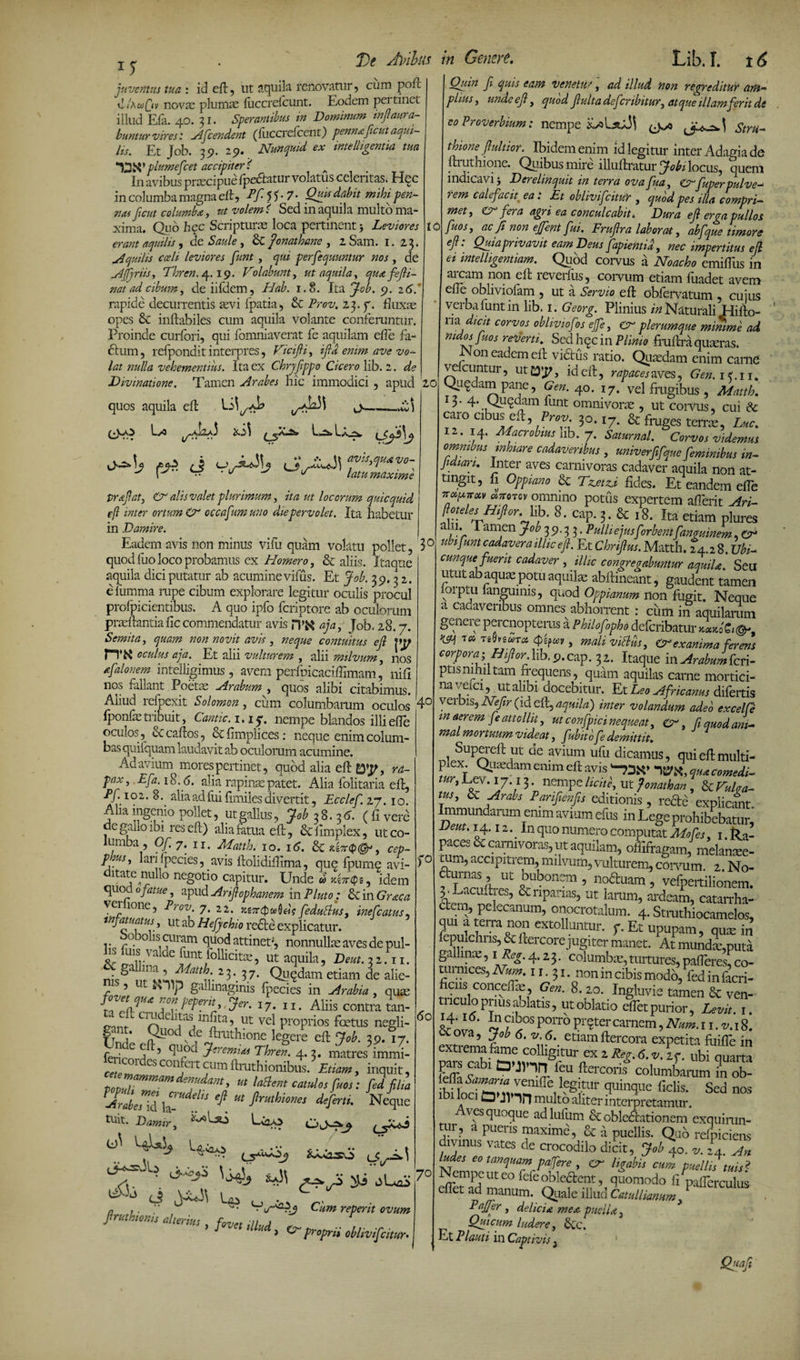 cum pod io 15 juventus tua : id ed, ut aquila renovatur , -L xI/acoQiv novae plumas fiiccrefcunt. Eodem pei tinct illud Efa. 40. 31. Sperantibus in Dominum inflaura- buntur vires: Aflcendent (fuccrefcent) penna ficiut aqui¬ lis. Et Job. 39. 29. Nunqmd ex intelugentia tua T3K’ plumefcet accipiter e I11 avibus praecipue fpedatur volatus celeritas. Hec in columba magna ed, Pfl 5 E 7• Quis dabit mihi pen- nu ficut columba, ut volem \ Sed in aquila multo ma¬ xima. Quo hec Scripturas loca pertinent 3 Leviores erant aquilis , de Saule , dc flonathane , 2 Sam. 1.23. Aquilis cceli leviores funt , qui perfequuntur nos , de AJfjriis, Thren. 4.19. Dolabunt, ut aquila, qu<t fefli- nat ad cibum, deiifdem, Hab. 1.8. Ita Job. 9. 2 6.' rapide decurrentis aevi fpatia, &amp; Prov. 23. f. fluxas opes &amp; inflabiles cum aquila volante conferuntur. Proinde curfori, qui fomniaverat fe aquilam ede fa- 6tum, refpondit interpres, Dicifti, ifid enim ave vo¬ lat nulla vehementius. Ita ex Chryflppo Cicero lib. 2. de Divinatione. Tamen Arabes hic immodici , apud 20 quos aquila efl t>-— (J^O L/O 20 J ,a-s» La.U ■A_2W sb*\ U avis,qua vo- ''1 / , . > maxime proflat, &amp; alis valet plurimum, ita ut locorum quicquid efl inter ortum O* occaflumuno die pervolet. Ita habetur in Damire. Eadem avis non minus vifu quam volatu pollet, 3° quod fuo loco probamus ex Homero, &amp; aliis. Itaque aquila dici putatur ab acumine vifus. Et Job. 39.3 2. efumma rupe cibum explorare legitur oculis procul profpicientibus. A quo ipfo fciiptore ab oculorum praedantia fic commendatur avis JTK aja, Job, 28.7. Semita, quam non novit avis, neque contuitus efl Vj/ 1 oculus aja. Et aln vulturem , aln milvum, nos tfalonem intelligimus , avem perfpicaciffimam, nifi nos fallant Poetas Arabum , quos alibi citabimus. Aliud refpexit Solomon, cum columbarum oculos 4° fponfetribuit, Cantic. 1.15. nempe blandos illi ede oculos , cc cados, &amp; fimplices: neque enim colum¬ bas quifquam laudavit ab oculorum acumine. Ad avium mores pertinet, quod alia ed ra¬ pax, Efa. 18.6. alia rapinas patet. Alia folitaria ed, Ef. 102. 8. alia ad fui fimiles divertit, Ecclef. 27.10. Aha ingenio pollet, ut gallus, Job 7%. 16. (fi vere degailo ibi res ed) aliafat.ua ed, &amp; fimplex, ut co¬ lumba , Of. 7. n. Matth. 10. 16. dc cep- phus, lari fpecies, avis dolididima, que fpume avi- itate nullo negotio capitur. Unde w idem quod 0 fatue, apud Ariflophanem in Pluto: &amp; in Graea ver lone, Prov. 7. 22. feduttus, inefeatus, infatuatus, ut ab Hefychio rede explicatur. y 0 obs curam quod attinet;, nonnullas aves de pul- u fms vnlde font fonidte, ut aquila, ZJw.ji.ii. ni7 ,!l2U l7' Qyqdam etiam de alie- ms, ut K-np gallmagmis fpecies in Arabia , qute >• »7. II. Aliis contra tan- llt vel proprios foetus negli- &amp; qy°df,e ftmthione legere eft Job. 39. 17. ferir A ’ Thren. 4.3. matres immi- ^MeSCOnfert5UmftrUthionibus- ^tum> inquit, 17“^®’ m laSem fd filia TiieZxZ f efiM firmhicm‘ dimi- N4e tuit- Damir, Uko L&amp;Cxo - ■ ■■ ... .. . » ci 0 .. n ,. .' Cum repent ovum Jtruthioms alterius . ,7; , 1 proprii oblivifeitur• ^ venetus, «//«i «0« regreditur am¬ plius, unde efl, quodfluita defer ibitur, atque illamferit de eo Proverbium: nempe ^/0 Stru¬ thione flultior. Ibidem enim id legitur inter Adagia de druthione. Quibus mire illudratur Jobi locus, quem indicavi J Derelinquit m terra ovafua, eAfuperpulve¬ rem calefacit ea i Et oblivifeitur , quod pes illa compri¬ met, &amp; fera agri ea conculcabit. Dura efl erga pullos fuos, ac fi non efflent fui. Fruflra laborat, abfque timore efl: Quia privavit eam Deus fapientid, nec impertitus efl ei intelligentiam. Quod corvus a Noacho emifTus in arcam non efl reverfus, corvum etiam fuadet avem effe obliviofam , ut a Servio ed obfervatum cujus verba funt in lib. 1. Georg. Plinius in Naturali Hido- lia dicit corvos obliviofos effe, Cr plerumque minime ad nidos fuos reverti. Sed hec m Plinio frudra quasras. on eadem ed vidtiis ratio. Quadam enim came ve cuntur, ut , id ed, rapaces aves, Gen, 1 <. 11. Quqdam pane, Gen. 40. 17. vel frugibus, Matth. lr 4' Quedam funt omnivoras , ut coitus, cui £c caro cibus eil, Prov. 30.17. &amp; fruges terd, Luc. 11' .,4* Macrobius lib. 7. Saturnal. Corvos videmus omnibus mhtare cadaveribus , «mverfifam feminibus in- Jidian. Inter aves carnivoras cadaver aquila non at¬ tingit, fi Oppiano oc Tzjstzi fides. Et eandem ede **(**** “f*™ omnino potus expertem aderit Ari- fiotelesH,ftor..lib. 8. cap. 3. &amp; 18. Ita etiam plures 1. Tamen Job 39.33. Pulli ejus[orbent fanguinem, cr uhfunt cadavera illic efl. Et Cbriftus. Matth. 24.28. Ubi- cunque fuerit cadaver ,. illic congregabuntur aquiU. Seu utut ab aqu^ potu aquilae abdineant, gaudent tamen oipiu fangumis, quod Oppianum non fugit. Neque a cadaveribus omnes abhorrent : ciim in aquilarum genere perenoptems a Philofopho deferibatur ««koCi®* K&amp;\ T0i T60»6«TCb flflw , mali vittiis, exanima ferens corpora, q or. hj, 9. cap. 32. Itaque in Arabum feri- ptis nihil tam frequens, quam aquilas carne mortici¬ na veici, ut alibi docebitur. Et Leo Africanus difertis verbis, Neflr (id ed, aquila) inter volandum adeo excelfe m aerem fe attollit, ut confpici nequeat, CA, fl quod ani- ma, mortuum videat, fubito fe demittit. Supered ut de avium ufu dicamus, quiedmulti- piex Quaedam enim ed avis 7^, qHA comedi¬ tur, Lev. 17.13. nempe licite, ut fonathan, &amp; Vulaa- tus, dc Arabs Pariflenfls editionis, rede explicant, mmundamm enim avium efus in Lege prohibebatur, Deut. 14.12. In quo numero computat Mofes, 1. Ra¬ paces dc carnivoras, ut aquilam, odifragam, melan^e- cum, accipitrem, milvum, vulturem, coivum. 2. No- U£ Puoon^5 noduam, vefpeitilionem. Item nplf ’ &amp;nPanas> ut |arunb ardeam, catarrha- dem, pelecanum, onocrotalum. 4. Struthiocamelos, qm a terra non extolluntur. f. Et upupam, quin in fepulchiis, &amp; dercore jugiter manet. At mundx',puta &amp;alinie, 1Reg. 4.2 3. columbae, turtures, pafleres, co- turmees, Num. 11. 31. non in cibis modo, fed in facri- ficns concedas, Gen. 8.20. Ingluvie tamen dc ven- tnculo prius ablatis, ut oblatio effet purior. Levit. 1. P^r v ,fS P°1Tb pr?ter carnem 5 Num. 11. v. 18. Saemaf/mp fl etlam ftercora expetita foiffe in waS fc2*f- ub* quarta LJ v b ^ J Tl ffU .ftercons columbarum in ob- Svtur V**** ficlk Sed nos O II Tn multo aliter interpretamur, v es quoque adlufum &amp; obledationem exquirun¬ tur, a pueris maxima, &amp; a puellis. Qab refpiciens divinus vates de crocodilo dicit, Joblo. L An ludes eo tanquam pafere , cr ligabis cum puelli?tuis* s ili JUS 70 ^eridC!me0fefeSlefelr ’.qUomodo fl pailerculus effet ad manum. Quale lhua Catulliamm . . Pn/Tor ___ >i * 0 60 Paffler , delicia mea puella, Qui cum ludere, dic. Et P lauti in Captivis} Quaft