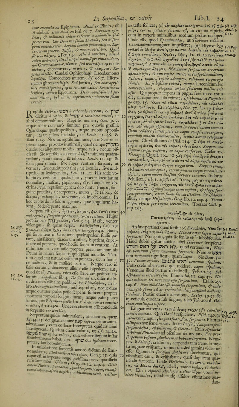(« 2, c. 17. (i) H.f.47. 23 tuor exempla ex Epiphanio. Aliud ex Plinio, &amp; Arabibus. Item aliud «rPfaLf8.7.x Serfintu agi¬ litas. &amp; infirmatio eodem refertur a nonnullis^ jed prater rem. Cur Deus non folum Diabolo, fed&amp;fer- penti maledixerit. Serpens homini quam odiofus. La¬ certorum genera. Talpa, &amp; mus in reptilibus. Quid ft lAvuvd&amp;v, zPec. i.p. N/zz a muribus, *z/zz 4 talpis deducunt, */» ** »/ 'proxima vident, quiGrxce dicuntur pvuw fed uuund&amp;n ejl oculis Serpentibus, Lib. I. 24 C<plO<oO(Ql. V>OinCUCIlLCS IUUICII1, SIJ. 00.7. rXLCIO nymus glires intelligit. 5W Jarboa, /?zz choerogrjl- lus3 muris fpecies , wz Arabum cibis. Reptilia non fruftra, contra Epicurum. Deus reptilibus ad poe¬ nam utitur 5 t/f/ z/z iis reprimendis virtutem fuarn exerit, eptile Hebrds * calcando terram, &amp; jHt? LV dicitur i copia, &amp; u7ni’ a tarditate motus, ut alibi demonftrabitur. Reptilis nomen, G>». 9. 3. atque alibi non raro fumitur pro quovis greflili. Quandoque quadrupedibus , atque avibus opponi¬ tur , ita ut pifces includat , ut Levit. 11. 46. &amp; AVz. 1.23. Nos hic reptileliimimus, ut in Scriptura plerumque, pro quovis animali, quod nempe n^PD quadrupes aliquantas molis, neque avis , neque pil¬ eis elt. Sic reptilibus accenlet Mofes minima quadru¬ pedum , puta mures , &amp; talpas , Levit. 11. 29. &amp; exlanguia omnia ; live liiper ventrem ferpant, ut vermes 5 live quadrupeda fmt, ut ioculhi > live mul¬ tipeda, ut fcolopendra, Lev. 11.42. His adde vo¬ lucria ex verfu 20. quales funt, praeter locuftamm nonnullas, mufeae, papiliones, &amp;c. Itaque ex do- dtrinaMofs reptilium genera duo funt: baiux, fan- guine prasdita, ut ferpentes, mures , &amp; talpae 5 &amp; avenda, exlanguia, ut vermes, Sc infecta omnia. In hoc capite de iis folum agemus, quae fanguinem ha¬ bent, &amp; de ferpente maxime. Serpens elt £&amp;>ov , k^neTov ,tvai[/,ov, QoAiJonov: ani¬ mal reptile, fanguine proditum, cortice t ellum. Hujus propria pars jlpO gachon, Gen. 3.14. id elt, venter oblongus , in quem ferpit. Philofophus, (a) D zoiAictv 0 ocp,? 5 OIOV brspov iopu^wpss-gpoy. Sunt, qui ferpentem in Creatione quadrupedem fuilfe pu¬ tant, autfaltem, draconum inltar, bipedem, &amp; per¬ tinere ad poenam, quod hodie ferpit in ventrem. At mihi non ht verilumle propter peccatum hominis Deum in natura ferpentis quidquam mutalfe. Tan¬ tum quod erat naturae cedit in poenam, ut in homi¬ ne nuuitas, Sc in muliere partus. Neque vero id fitis ceitum, draconem ullum elfe bipedem, aut, quod ait (b) Plinius, vilos ede ferpentes pedibus an- ferirns. Augujlmus lib. 3. De Gen. ad lit. diferte alfe- nt dracones elfe fine pedibus. Et Philofophus, in li¬ bi o De mcefju animalium, multis probat, neque duos neque quatuoi pedes polle ferpenti fufficere propter enoimemcorpoiis longitudinem, neque polleplures haberi,quia r axttpw fxtjDv Lov r etvou jrA«ocn eyi^doig y.ubc-cu, y, tA,ot(><riv. Unde necellariam ede concludit in lerperrte t>jV «VodAv. Seipentumquidamlaltuvalent, ut acontias, quem -/■ 34.1 y. delignari nomine kippox, primi anim- a vemmus , cum eo loco Interpretes quidvis aliud ntelhgerent. Quidam etiam volatu, ut Ef 14.29. bdra volans, quasvefpertilionuminltar nembra„ habet alas, ‘«p» cur h^ram inter- pruer, luo loco edilferam. 1 J nemulieris^//^nJ ^'erPent^s mcrito didtum de femi- ^3-V- quia rarofuccumbit pars’ ‘5l,a,llxla autem Plinius, ftcredetul mdf''2 Cap' D>C‘‘ cim dtwhs evaferit dinth ?JfN' mamJ‘ J ‘SUts, ntbilomtnusvivit. ^lia- IO 20 3° r° 40 60 70 no telle fcilicet, (c) rjv xygftuv ■/.MX^wraa in} rij Cc) pwjcor in gutture for t itus ejl, in vicinia capitis, An' 1‘ i» cum in anteris animalibus medium pedtus occupet,c'31* Unde elt, quod Epaminondas, ut Thebanos redtaiil Lac e d Ltmoniorum agmen impelleret, (d) Miyisov t%iv rd)p, <r\)foot£d)v Uit£tv uvTQ7g>yfji 7TotvTU]> cmvr/ov ty,r ntQxAsjv \n.l. °z.' $ SvifiS cvvTftfoig , ‘OpoiTg, scfuj , OTI Tfi Aoizrov Qoopix Strautg. *Zf oi%pi%r,r Sruftfa t «r TraAe^iwy 3ce4«A«qro Aomuvmov txto to Ao<7rov c-w^cae r evuua^w «^pjjffoy. Maximum ferpentem arreptum oflendit ipfis, N ejus capite attrito in confpeHu omnium^ Didetis, inquit^ capite adempto, reliquum corpusejfe inutile. Ita f hojlium capita, Laconicum hoc contriverimus , reliquum corpus f ociorum nullius erit ufus. Quapropter ferpens in pugna fere in eo totus elt, ut caput periculo eximat, Epiphanius in Phyfolo- g°) cap. Ip. c'OAov TO (Tftheas nctfuSlSuiti, T)jv xgc^osAjjV //ov>jv cpuAaoygi. Et in Ophitas^ Htr. 37. ’Ev r<3 Jium- ynuQtuiv 0u hv t? xg^ooAi} «ura ^ 7ra<r* ^>3 TUj/^afve/, aAoy to eau» cptihipug 'Qn ttjv kQxzKyjv dvrx xpJtttsi flo roxparfov *etfetWu<r, $ to «,’Mo <rw- jWos. aliquo appetitus, zVz capite vitam omnem fiam 1 efdere fentiat jtoto in caput complicato corpore^ cranium quidem frnrn occultat, mzofe reliquum corpus. Chryfoltomus w Pfal. 114. co ocfn? to Aoxsxoy TrpojSTo», W9£ tjjv x£Cp#Ajjir hotfftLffeu, Serpens re- liquum corpus exponit ^ ut caput confervet. Gnfarius, Dialogo 4. Qu^lt. 192. ‘O yd(> SQk vtto (3?ot5 Swdpu Xfltr«A£$0«f, oAov fo tw noiiovTi re <rct>y,x mpoiiToa. tytv De KiCpaAjjV «Tpwrcv cj>p»p«v ^oimTui. Serpens enim, ab homine vi correptus, totum equidem corpuspercutienti ■ objicit, caput autem ill&amp;fum fervar e conatur, Ilidorus Peluiiota, /z^. 1. Epijl. I2d. Oirosif ‘Tt^picolcect i nfvydts 0 ewi^TOtl, Tvjv IslVTX 4vA«TT£X K£($Oi- A>jv dQhuQd Quibufcunque enim cafbns, &amp;plafsfer¬ pensprematur, caput frnrn fervat ilUfum. Et Ifdorus ahus, nempe Hifpalenfs, lib. 12. cap. 4. 7mxm» pro ferientibus. Tzetzes Chii. 9. cap. 263. ’iV7tTofu@J eig (povov, YIaVTQl0Tp07tU){ Tt]V X.i(Polfv Tt]V ioiV$ Cgy* xpvTna. An huc pertinet quod feribit (c) Sirachides, ’0w esa p) Ecclef. xtQaAti v7ts(> K£<p0tA>jy o4>£wf. i\Ton eflcaputfupra caput i-S.i6.al. ferpentis? Non puto, quia fic fenlus eflet fubobfcuras. i8.al.zi. Haud dubie igitur auctor libri Hebraice fcripferat &amp;TUn TO“) V quod vertendum, Non. ejl venenum fupra venenum ferpentis. Nempe tam venenum lignificat, quam caput. Sic Dem. 32. 33. Vinum eorum, OUTto venenum afpidum Toto coelo aberraret, qui redderet caput afpidum Venenum illud partim in felleelt, Job.zo. 14. Eel afpidum in interiori ejus. Plinius lib. 11. cap. 37. Ne quis miretur fel venenum ejfe ferpentium. Et lib. 29* cap. (5. Non aliud hoc ejfe quam fel ferpentium, &amp; inde venis fub fpina ad os pervenire diligentijfimi auttores fer ibunt. Partim etiam in dentibus, Ecclef 39.37. &amp; in velicula quadam lub lingua^ ideo Job. 20.1 <5. Oc¬ cidet eum lingua vipera. Linguas extrema, Kzzrd mxu t p/W (f) capilla¬ menti tenuitate. Quo David refpiciens, Pfal. 140. 3. V\ f .Acuerunt, inquit, linguasfuas ,fcutferpentes. Plautus e, 17. bilingues non femel vocat. iNm Perfa, Tanquampro- ' ferpensbejlia, ejl bilinguis, &amp;fceleflus. Et in Afn ama LibamusPhilenium ad ofculum ita invitat. Fac pro- ferpentem bejliam, duplicem ut habeam linguam. Nem¬ pe, fi Salmafo credimus, ferpentis tam tremulo mo- tu linguam culpant, ut non una/ed gemina videatur ede. Quomodo farijfam duplicare dicebantur, qui vibrabant eam, &amp; crifpabant, quali duplicem qua¬ tiendo dicerent. Unde Hefychitts, ndM£(, xpJd- nt, TOC Svjutci JiwAor, id efl, vibrat hajlas, &amp; dupli- C,at' ,.t E* Npzz/ozz Apologia Lahus ivfyag vocat in¬ dices bicodulas, quod caudq alfidua vibratione qua- dan-