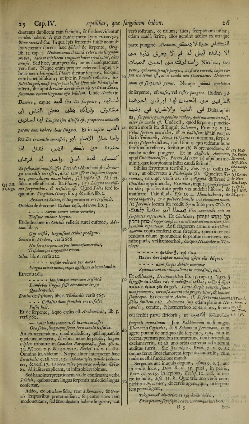 (g) libi dantenus duplicem eam faciunt, &amp; fic duas videntur caudas habere. A quo caudae motu Jynx etKtoTrvyU, &amp; motacilla di&amp;a. In qua ipfa fententia fuifie nonnul¬ los veterum docent haec IJidori de ferpente, Orig. lib. 12. cap. 4. Nullum animal tanta celeritate linguam movet, adeo ut triplicem linguam habere videatur, cum unafit. Sed haec, utut fpeciofa, tamen haudquaquanl vera funt. Neque enim propter celerem lingue vi¬ brationem bilinguis a Plauto dicitur ferpens, fed quia eam habet bifulcam * ut ipfe in Poenulo teflatur, Bi- fulci lingua, quafiproferpens bejlia. Proinde Philofioghus afTerit,ubifupra<l»7rAo<3tv ol\nu)> Avon t>?v yAwrf#» axpav* fummam eorum linguam ejfie bifidam. Unde vir ab es in Damire , Capite feu De fierg ente , L^pLuO fj\ ^1X33 ijaas &amp;&amp;S ^$3 (jpoLuJ Lg$ Lingua ejus divifia efi, grogterea nonnulli .n gutant dum habere duas Unguas. Et in cagite 1 feu De crocodilo terrefiri, ^>0^3 (3^ iO^ JUi (4*^ XjLffiA S Etgofiquam inquifiiviffiet Sacerdos Abuchanipha de vir¬ ga crocodili terrefiris, dixit eam ejfie ut linguamfiergen- tis, qua radicem unam habetfied bifida efi. Alii tri- fulcam efie afferunt. Ita Plinius, (g) Lingua tenuiffi- ma fiergentibus, dr trifiulca efi. Quod Poeta fere fe- quuntur. Virgilius, Georg. lib. 3. &amp; NEn. lib. 1. Arduus ad Solem, &amp; linguis micat ore trifiulcis. Ovidius de dracone a Cadmo cefo, Metam, lib. 3. - - - - corgus tumet omne veneno, Trefique micant lingua. Et de dracone in Colchis velleris aurei cuflode, Me¬ tam. lib. 7* Qui crifid, linguifque tribus grafignis. Senecam Medea, verfii 68(5. Hicfiera fierg ens corgus immenfium tr ah it, Trifidamque linguam exertat. Silius lib. 6. verfii 22.2. trifido vibratd ger auras Lingua micat motu, atque affiultans athera lambit. Et verfii 264. ----- jamjamque extrema trifiulca Lambebat lingua fiejji certamine terga Quadrugedis. Statius de Pythone, lib. I - Thebaidis verfii f6f. - - - Cafialiis dum fontibus ore trifiulco Fufius hiat. Et de ferpente, a quo cadus efi Archemorus, lib. 7. ver£ 780. *■— volat hafia tremens, d hiantia monfiri Orafiubit, lingmque fiecat fera vincla trifiulca. An eo referendum, quod maledico, qui linguam in quofcunque exerit, &amp; vibrat more ferpentis, lingua triglex tribuitur in Chaldaa Paraghrafi, Job. 36. ia 33. Pfi. 101. v. 7. &amp; 140.^. 12. Ecclefi. 10. v. 11. &amp;c. Omnino ita videtur : Neque aliter interpretor haec Sirachidis c. 28.verl. I p. TAwj-cos rpmj voltxfi isuAiv- ezv, Sc verf. 17. rAw<r<r&amp; TptV)j ywuTKois dvJfixg As. Alii aliter explicant, ut infra obfervabimus. Sed hanc interpretationem valde confirmant verba Pfialtis, quibus cum lingua ferpentis maledici lingua confertur. Addo, ex Arabum fide, rem a Romanis, LcGr si¬ cis fcriptoribus pretermifiam , ferpentes alios non modo acutam, fed &amp; aculeatam habere linguam, aut vero roftrum, &amp; riafum 3 alios, fcorpionum iriflar , etiam cauda ferire 3 alios gemino aculeo ex utraque parte pungere. Al camus, ^ jc3 1 w.a3 3 NiCchaz, fier- 10 20 40 3° f° 60 7° *.3 2U0L3 ^3 gens 9 quinonnifinafiognngit, acfiore careat, cujus ca- gut ita tenue efi, ut d cauda nOn fiecernatur. Deterri¬ mum efi fierg entis genus. Nempe nachasLa de ferpente, cfl na fio, vel rofiro g ungere. Ibidem jS L^3 0^ cd^vk3\ Dultaraphi- na , fierg entis genus gemino aculeo , quorum unus in nafio, alter in cauda efi. Unde efi, quod ferpentis punctio¬ nem amorfu ita diflinguit Salomon, Prov. 23. v. 32. Velut fiergens mordebit, d bafiilificus g unget. Ita in fucat ana, HifipanD contermina, ferpens ex eo Polgoch dictus, quod fibilus ejus videatur hunc fere fonum referre, fcribitur (h) &amp; ore mordere, Vlde caudae aculeo pungere. Et in Aufirali America,, Elgb, apud Chiribichenfi?s, Petrus Martyr (fi) afpidum me- Nieremb. * minit, quae fcorpionum inflar cauda feriunt. ^'A Sibilus ferpentum terribilis, Sag. ij.9. exilis ta- men, ut obfemtur a Philofiogho (k). Qiiocirca fe- (t)Deor* r emi as, cap. 4^. veifii 22. de zAdgygto differens a ^ovo Chaldais opprimenda, Vox illius, inquit, quafifieigen- Dec: 8 cap' tis ibit3 quiafervitute prefla vix audebit hifcere, &amp; QQwfl. muffitare. Tale illud, Efia. 29.4. Humiliaberis, de lib. terra loqueris, d1 c gulvere humile erit eloquium tuum. At J er emi a locum ita reddit Interpres m\rs exercitus erit ut fiergentis regtitantis. Et Chaldaus3 bjp i'Vm pro Fragor collijionis armorum eorum erit ut fier- gentium regentium. Ac fi fragorem armorum in Chal- daorum copiis conferat cum ftrepitu, quem inter re¬ pendum edunt quorundam ferpentum cortices, ce- raflae puta, vel haemorrhoi, dc quo Nicander in The- riacis. * A * *  QoKieiv rfi.j clfico Uavfov vVfl4oQewv HuM/xyg •gyciv oTa - - - - dum fiergit debile murmur Squamarum attritu,, calcata ut arundinis, edit. EtMllianuS) De animalibus lib. 17. cap. 13. $ ^ 4)oA/(ffl4f, Ao|ov 3 oijaotr 7rpae<<r;v ventris fiqua- masgremens , tortuofia autem viagrogreditur, &amp; leniter fiubfiregit. Et de cerafte Aetms, (/) In fierg endo fionum (l)Tetrrb. Jibilo Jimilem edit. Avicenna (m) etiam plane ut Ni- 4° Serm. t. cander, cerafle, &amp; haemorrhoo reptantibus, fonumcap:l8, 1 , (»?) edi fcribit parvi flridoris, ut U-crai) fragoris arundinum. Jam Rabbinornm audi nugas. Eliever in Cagitulis, .&amp; R. Selomo in Jeremiam, eum agere putant de antiquo illo ferpente, qui, cuin in peccati poenam pedibus truncaretur, tam horrend um exclamaverit, ut ab uno orbis extremo ad alterum auditus fuerit. Sic Jonathan , Exod. 7. v. p. ait omnes terrae fines clamorem ferpentis audivifle, cum . nudatus efi a fundatione mundi. Serpentes aut in aquis degunt, Amos 9. v. 3. aut in aridis locis, Deut. 8. v. 17. puta, in petris, Prov. 30. v. ip. in fepibus, Ecclefi. 10. v. 8. in ter¬ rae latibulis, Efia. 11. 8. Quae tria uno verfu com- pledtitur Nicander, de cervis agens, qui, utferpen- tempervefligent, Tfo^dAot^ ctlfAoiegsig ts vfij «AviW ifiiXcn, Saxagetuntjfiegefique, cavernarumque latebras. B z Ser-