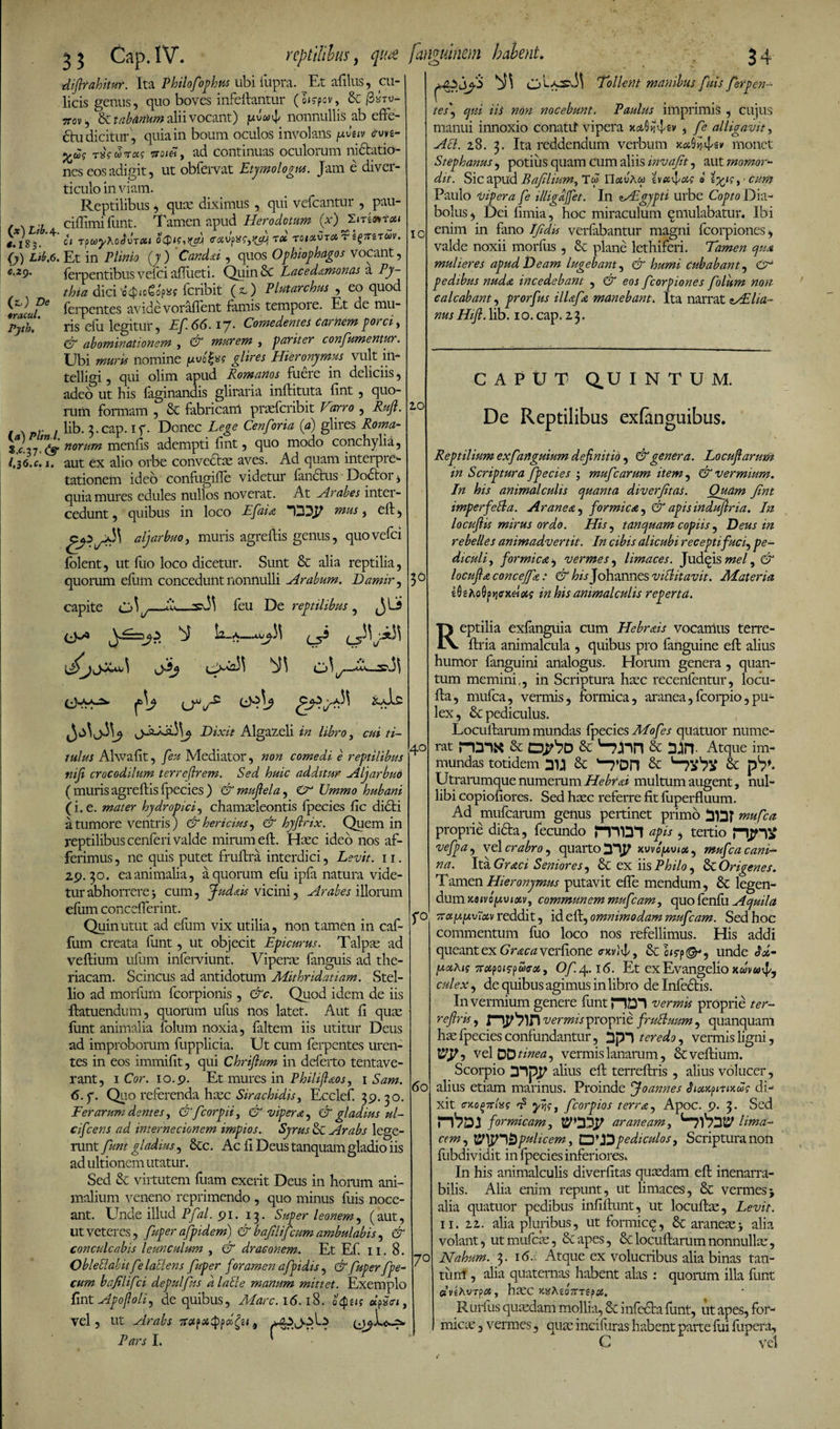(*) Lib. 4. 18 3 • (j) Ltb.6. e,29. (&amp;) De 9racul. Pyth, (a) Plin i. «.«•37 /, 36« c» 1 • 33 Cap.1V. reptilibus, ^ janguinem habent. difirahitur. Ita Phitofophns ubi iupra. Et afilus, cu¬ licis genus, quo boves infeflantur (Wpov, &amp; /3*™- ttov , &amp; tabanum alii vocant) juuwj' nonnullis ab effe¬ ctu dicitur , quia in boum oculos involans [avuv cruvs- txVww wo/eT, ad continuas oculorum nidlatio- nes eos adigit, ut obfervat Etymologe. Jam e diver¬ ticulo in viam. Reptilibus , qux diximus , qui vefcantur , pau- ciffimi funt. Tamen apud Herodotum (x) 2<rkvrtoyi qi T?uyKo$vToci rct toiclvtolt ^Tmuv. Et in Plinio (y ) Candai, quos Ophiophagos vocant, ferpentibus vefei aflueti. QuinSc Lacedamonas a Py¬ thia dici 'o’cf5<o6op»ff feribit (&amp;) Plutarchus , eo quod ferpentes avide vorafient famis tempore. Et de mu¬ ris efu legitur, Ef. 66.17. Comedentes carnem porci , &amp; abominationem , &amp; marem , pariter confumentur. Ubi muris nomine juvofy? glires Hieronymus vult in- telligi, qui olim apud Romanos fuere in deliciis, adeo ut his (aginandis gliraria inflituta fint , quo¬ rum formam , &amp; fabricam praeferibit Carro , Ruft. lib. 3-cap. if. Donec Lege Cenforia (a) glires Roma¬ norum menfis adempti fint, quo modo conchylia, aut ex alio orbe convectae aves. Ad quam interpre¬ tationem ideo confugiffe videtur fandius D odior, quia mures edules nullos noverat. At Arabes inter¬ cedunt , quibus in loco Efaia D3T mHS * * ^33 aljarbuo, muris agreflis genus, quovefei folent, ut fuo loco dicetur. Sunt &amp; alia reptilia, quorum efiim concedunt nonnulli Arabum. Damir, £j\ ._th_:sx33 feu De re, -eptilibus 5 E A. 11^4.33 l>co33 ^3 IC 20 (3^3 (>33j gfsihsi.33^ Dixit Algazeli in libro, cui ti¬ tulus Ahvafit, feu Mediator, non comedi e reptilibus nifi crocodilum terreflrem. Sed huic additur Aljarbuo ( muris agreflis fpecies ) &amp; muflela, Cr Ummo hubani (i. e. mater hydropici, chamaeleontis fpecies fic didti a tumore ventris) &amp; hericius, &amp; hyjlrix. Quem in reptilibus cenferi valde mirum efl. Haec ideo nos af¬ ferimus , ne quis putet fruftra interdici, Levit. 11. 29.30. ea animalia, a quorum efu ipfa natura vide¬ tur abhorrere3 cum, Judais vicini, Arabes illorum efiim concefierint. Quin utut ad efiim vix utilia, non tamen in caf- fum creata funt, ut objecit Epicurus. Talpae ad veflium ufum inferviunt. Viperae fanguis ad the- riacam. Scincus ad antidotum Mithridatiam. Stel¬ lio ad morfiim fcorpionis, &amp;c. Quod idem de iis flatuendum, quorum ufiis nos latet. Aut fi quae funt animalia folum noxia, faltem iis utitur Deus ad improborum fupplicia. Ut cum ferpentes uren¬ tes in eos immifit, qui Chrijlum in deferto tentave- rant, 1 Cor. 10.9. Et mures in Philijlaos, 1 Sam. 6. y. Quo referenda hazc Sirachidis, Ecclef. 39.30. E er arum dentes, &amp; fcorpii, &amp; vipera, &amp; gladius ul- cifcens ad internecionem impios. Syrus &amp; Arabs lege¬ runt funt gladius, Scc. Ac fi Deus tanquam gladio iis ad ultionem utatur. Sed &amp; virtutem fuam exerit Deus in horum ani¬ malium veneno reprimendo , quo minus fuis noce¬ ant. Unde illud Pfal. 91. 13. Super leonem, (aut, ut veteres, fuper afpidem) &amp; bafilif:um ambulabis , &amp; conculcabis leunculum , &amp; draconem. Et Ef. 11. 8. ObleBabitf? latiens fuper foramen afpidis, &amp; fuper fpe- cum baflifci depulfus d laSle manum mittet. Exemplo fint Apojloli, de quibus, Alarc. 16.18. oQtis dfa , vel , ut Arabs 9 Pars I. 30 4° f° 60 7° jjO b}3 cA^-^3 Tollent manibus fuis ferpen- tes\ ejui iis non nocebunt. Paulus imprimis , cujus manui innoxio conattf vipera x&amp;Cfiv , fe alligavit, Aci. 28. 3. Ita reddendum verbum y.affsv monet Stephanus, potius quam Cum aliis invaft, aut momor¬ dit. Sic apud Baflium, Tw UctvKo) zvxfxc a tyiq , • cum Paulo vipera fe illigdjfet. In AEgypti urbe Copto Dia¬ bolus, Dei limia, hoc miraculum emulabatur. Ibi enim in fano Ifdis verfabantur magni feorpiones, valde noxii morflis , 6c plane lethiferi. Tamen qua mulieres apud Deam lugebant, &amp; humi Cubabant, CE pedibus nuda incedebant , &amp; eos feorpiones folum non calcabant, prorfus HDfa manebant. Ita narrat AEha- nusHifl. lib. io.cap. 23. CAPUT Q^U I N T U M. De Reptilibus exfanguibus. Reptilium exfanguium definitio, &amp; genera. Locufiarum in Scriptura fpecies ; mufcarum item , &amp; vermium. In his animalculis quanta diverftas. Quam fnt imperfeBa. Aranea, formica , &amp; apis indujlria. In locufiis mirus ordo. His, tanquam copiis, Deus in rebelles animadvertit. In cibis alicubi recepti fucf pe¬ diculi, formica j vermes, limaces. Judqis mei, &amp; locufia concejfa : &amp; his Johannes viBitavit. Materia in his animalculis reperta. Reptilia exfanguia cum Hebrais vocamus terre- flria animalcula , quibus pro fanguine efl alius humor fanguini analogus. Horum genera, quan¬ tum memini,, in Scriptura haec recenfentur, locu¬ fia, mufea, vermis, formica, aranea,fcorpio,pu¬ lex, &amp; pediculus. Locullarum mundas fpecies Mofes quatuor nume¬ rat nmx &amp; &amp; '-?:nn &amp; 2JHT Atque im¬ mundas totidem M &amp; ^7’DH &amp; Utrarumque numerum Hebrai multum augent, nul¬ libi copiofiorcs. Sed haec referre fit fiiperfluum. Ad mufearum genus pertinet primo 3121 mufea proprie didla, fecundo apis , tertio pip# vefpa, vel crabro, quarto xuvo^u^, mufea cani¬ na. \xbiGraci Seniores, &amp; ex iis Philo, &amp; Origenes. Tamen Hieronymus putavit efle mendum, &amp; legen¬ dum jt8<vo'|uu«j4v, communem mufeam, quo fenfu Aquila t:a[A[A,uccv reddit, id efl, omnimodam mufeam. Sed hoc commentum fuo loco nos refellimus. His addi queant ex Gnecvzverfione <rxv)4, &amp; bs-p^, unde Ad- [xaiAis TTctpoicpobffot, Of/\..i6. Et exEvangeliojcwi/anJ, culex, de quibus agimus in libro de Infedtis. In vermium genere funt vermis proprie ter- reftris, f7^7in vermis proprie fruBuum , quanquam ha; fpecies confundantur, f]p*) teredo, vermis ligni, tTP, vel 00 tmea, vermis lanarum, &amp; veflium. Scorpio DIpP alius efl terreflris , alius volucer, alius etiam marinus. Proinde T°annes Jiompitaug di¬ xit c-Ao^ttlns yfc, fcorpios terra, Apoc. 9. 3. Sed formicam, tyODp araneam, lima¬ cem, pulicem, £3'X2 pediculos. Scriptura non fiibdividit in fpecies inferiores. In his animalculis diverfitas quasdam efl inenarra¬ bilis. Alia enim repunt, ut limaces, 8c vermes j alia quatuor pedibus infiftunt, ut locuflce, Levit. 11. n. alia pluribus, ut formicq, &amp; araneae3 alia volant, utmufcae, &amp;apes, &amp; locufiarum nonnullae, Nahum. 3. 16.. Atque ex volucribus alia binas tan¬ tum , alia quaternas habent alas : quorum illa funt dvtAvTpa, haec WhiA-vipca. Rurfus quasdam mollia, 8c infecta funt, ut apes, for¬ micae , vermes, quae inciiiiras habent parte fui fupera, C vel