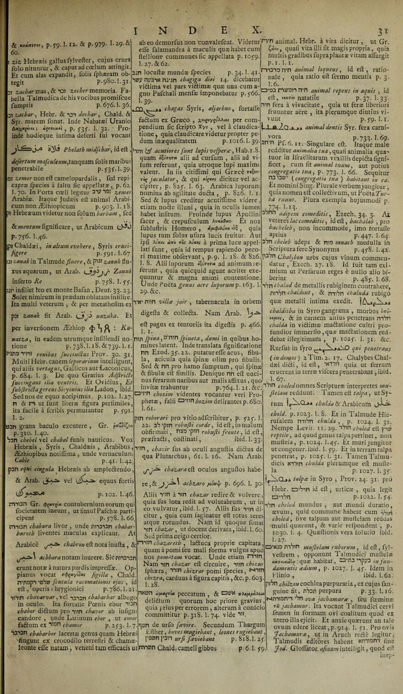 ' ir6f n •fo ] 12, &amp; p.979. E29.&amp; abeo demorfus non convalefcat. Videtur animal. Hebr. avita dicitur, ut Gr. ’ ' eile falamandra a maculis quae habet cum quali vita illi fit magis propria, quia ftellione communes lic appellata p. 105-9. multis gradibus fupraplant* vitam affurgit I.27.&amp;62. p.i.l.i. 60. ziz Hebraeis gallus fylvefter, cujus crura folo nituntur, &amp; caput ad ccelum attingit. Et cum alas expandit, folis fphoeram ob¬ tegit p.980.1.31. DT zachar mas,&amp;*OT zecher memoria. Fa¬ bella Talmudica de his vocibus promifcue fumptis p. 676.1.36 zachar, Hebr. &amp; 737 dechar, Chald. &amp; Syr. marem fonat. Inde Nabataei Uranio ; «§«»&lt;*•», p. 735'. 1. 32. ; Pro¬ inde hodieque intima deferti lui vocant Phelath midfichar, id eft , defiertum maficuleum, tanquam folis maribu; penetrabile p.737. 1-39 iDT zemer non eft camelopardalis , fed rupi caprae fpecies a faltu fic appellata, p. 62 1. 70. In Porta coeli legitur 37^7^1 zemer Arabiae. Itaque Judaeis eft animal Arabi¬ cum non iEthiopicum p.903. 1. 18 p? Hebraeum videtur non foXxsvn barbam , fec *• • &amp; mentum fignificare, ut Arabicum p. 776. I.46. Jpt Chaldaei, in altum evehere , Syris cruci¬ figere p. 791. I.67 Ut zanak in Talmude fluere, &amp;pU* zanuk flu- xusaquarum, ut Arab. Zanuk inferto Re p. 778. I. 77. MP infiliet leo ex monte Bafan , Deut. 33. 23. Solet nimirum in praedam oblatam inlilire Ita multi veterum , &amp; per metathefiinex Et 3J17 locuftae mundae fpecies p. 34.1. 41. 7»y ny37K ru^n chagiga diei 14. dicebatur vidima vel pars vidimae quae una cum a- gno Pafchali menfae imponebatur p. 766. 1*39 . chagas Syris, aljarbuo, fortafte fadum ex Graeco , per com¬ pendium lic fcripto Xy?, vel a claudica¬ tione, quia claudicare videtur propter pe¬ dum inaequalitatem p. 1016.1. 39. hm ^r* acutiores fiunt lupis vefipera, Hab. 1.8 quam oluTnTcc alii ad curfum , alii ad vi- lum referunt, quia utroque lupi maxirnt valent. In iis citiftimi qui Graece jaculator, &amp; qui dicitur vel ac¬ cipiter, p. 827. 1. 63. Arabica luporum nomina ab agilitate duda , p. 826. 1. 1. Sed &amp; lupus creditur acutiffime videre, etiam node illuni, quia in oculis lumen habet inlitum. Proinde lupus Apollini facer , &amp; crepufculum *vkoQm- Et nox fubluftris Homero , ifupadntn , quia lupus tum folus ufura lucis fruitur, 2\ut ipfi XvKti uno rr,? XtW a prima luce appel¬ lati funt, quia id tempus rapiendo peco- P7737D rvn animal loquens, id eft , ratio¬ nale , quia ratio eft fermo mentis p. 3, 1'. 6. CrM rvn animal repens in aquis , id eft, vfixTov natatile p.37. 1. 33. rrn fera a vivacitate, quia ut feras liberiori fruuntur aere , ita plerumque diutius vi¬ vunt p. 79. 1.1. i-XA2.QjL.jj» animal dentis Syr. fera carni- vora . p. 733.1.69. 3rvn Pf. 6. ir.-S+ngulare eft. Itaque male redditur animalta tua, quali animalia qua- tuor in Ifraelitarum vexillis depida ligni- licet , cum lit animal tuum, aut potius congregatio tua, p. 773. 1. 66, Sequitur na I3tr ( congregatio tua ) habitant in ea. Et nomini Sing. Plurale verbum jungitur, quia nomen eft colledivum, ut Poeta 7»r- ba ruunt. Plura exempla hujusmodi p. 774- E. H- 37ftn adipem comeditis, Ezech, 34. 3. At v eteres lac comeditis, id eft, hachalab , pro hacheleb, non incommode, imo lortalle aptius p.447. I.64. 370 cheleb adeps &amp; ms muacb medulla in Scriptura fere Synonyma p, 45*8. I.42', zanak fit Arab. nazaka per inverlionem iEthiop ^ ^ : Ka- natza, in eadem utrumque inliliendi no¬ tione p. 738.1.18.&amp;739.1.1. 3’Jnra 7’J7t renibus fiuccmdus Prov. 30. 31. Multi H ebr. canem leporarium intelligunt, qui aiiis vertagus, Gallicus aut Laconicus, p. 684. 1. 3. De quo Gratius Adflridh fuccingant ilia ventris. Et Ovidius, Et fubflri&amp;a gerens Sicyonius ilia Ladon, ibid Sed nos de equo accipimus p.102. I.27. 17 &amp; n ut funt literas figura perlimiles, ita facile a fcribis permutantur p. 791. 1. 2* S330 grana baculo excutere , Gr. p. 310. I.40. 73H chebel vel chabal funis nauticus. Vox Hebraeis , Syris , Chaldaeis , Arabibus, iEthiopibus notiffima , unde vernaculun Cable p.41, 1-42. p3n equi cingula Hebraeis ab ampledendo, &amp; Arab. vel equus fortis p. 102. I.46. rrni3n Gr. contubernium eorum qui focietatem ineunt, utfimulPafchae parti¬ cipent p. 778. 1.66. rmi3n chabura livor , unde ni7373n chabar- buroth liventes maculas explicant. At Arabice cbabron eft nota inufta , &amp; ■/**' acbbara notam inurere. Sicnn373n' erunt notae a natura pardis impreffae. Op- pianus vocat ffyuylfef figilla , Chald. JTTWp7 'toSty ficutula racemationis ejus , id eft , operis rhrygionici p. 786.1.21 ^7117 cbavarvar ,\t 1 73^n cbabarbar albugo in oculo. Ita fortalie Pcenis ebur 3i3n chabor didum pro 7UJ7 chavor ab infigni candore , unde Latinum ebor , ut emor fadbum ex chamor p. 273. 1. 7. 437317 chabarbor lacerta genus quam Hebraei 'fingunt ex crocodilo terreftri &amp; chamae¬ leonte effe natam, veneni tam efficacis ut ri maxime obfervant, p.9. 1. 18. &amp; 826..p^Vn Chalybon urbs cujus vinum commen- 1 o a,.-.-, .«/ - 1 datur, Ezech. 27. 18. Id tuit tam exi¬ mium ut Periarum reges e nullo alio bi¬ berint p. 487. 1.68, iSn chalad de metallis rubiginem contrahere, nnbn chaidout, &amp; rmVn ebaluda rubigo qua metalli intima exedit. chalditha in Syrogangrana , morbus «*•«- &amp; in carnem altius penetrans mbri cbalda in vidima madatione cultri pro¬ fundior immerlio ,qua madationem red¬ debat illegitimam , p. 1027. 1. 31. &amp;c, Rurfus in fyro qui penetrant {indomos) 2Tim.2. 17. Chalybes Chal- dai didi, id eft, 'Nlbn quia ut ferrum eruerent in terra vifcera penetrabant, ibid. 1. 8. Alii luporum «|ut»tu ad animum le- ferunt , quia quicquid agunt acriter exe- quuntur &amp; magna animi contentione. Unde Poeta genus acre luporump. 163. 1. 29. &amp;c. . TK' rmn vili ce jair , tabernacula in orbem digefta &amp; colleda. Nam Arab. \yA eft pagus ex tentoriis ita digeftis p. 466. 1. 1. nin fipina, i^nin ppineta, dumi in quibus ho¬ mines latent. Inde translata fignificatione nn Exod.37. 22. putatureffeacus, fibu¬ la, acicula quia fpinoe olim pro fibulis Sed &amp; nn pro hamo fumptum, qui fpinas &amp;fibulse eft fimilis. Denique nn eft unci nus ferarum naribus aut malis affixus, quo 1 1.67. invies» frahnnfnr n -r1 -&gt; t Rrr 77in cboledovCWitSo invitas trahuntur p. 764.1. 21. &amp;c. D'l'n cbozirn videntes vocantur veri Pro¬ phetae, falli omnhozim delirantes p. 680. I.61. pm roborari pro vitio adfcribitur, p. 72^. 1. 22. 31? ’pm robufli corde, id eft, in malum obfirmati, 17X0 'ptn robufli fironte, id eft, praefradi, obftinati, ibid. 1.33 7’tn, chazir fus ab oculi anguftia didus de qua Plutarchus, 61. 1. 16. Nam Arab. chazara eft oculos anguftos habe- achzaro p&amp;a-ty p. 696. 1. 30 Aliis 7’tn a 7tn chazar redire &amp; volvere, quia fus lota redit ad volutabrum , ut in eo volvatur, ibid. 1. 77. Aliis fus 7’m di¬ citur , quia cum faginatur eft totus teres atque rotundus. Nam id quoque fonat 7Tn chazar, ut docent derivata, ibid. 1.60 Sed primaorigo certior. r77in cbazareth , laduca proprie capitata. quam a pomi feu mali forma vulgus apuc nos pomatam vocat. Unde etiam ri7rn. Nam 7tn chazar eft circuire, 7Un chizur Iphtera, 77in chizrar pomi fpecies, Ixt7rn chizra, carduus a figura capitis, &amp;c. p. 603 1. 28. nKtJn ujteeegrut peccatum , &amp; E3$N 5r2i)^e2i«4 delidum quorum hoc priore gravius quia prius per errorem, alterum a confcio committitur p.318. 1. 74. vide 71T. f|an de urfo ficevire. Secundum Thargum Either, boves mugiebant, leones rugiebant pasn (’3n urfi fieviebant p, 818.L 27 smtsn Chald. cameli gibbus p.6,1.79 criptura; interpretes mu- fielam reddunt. Tamen eft talpa , ut Sy¬ rum chulda &amp;' Arabicum « chold. p.1023. 1. 8. Et in Talmude Hie- rufalem mdn chulda , p. 1024. 1. 32. Nempe Levit. 11. 29. cboled ell yyb reptile, ad quod genus talpa pertinet, non multela, p.1024. I.47. Et muri jungitur ut congener, ibid. 1. 79. Et in terram talpa penetrat, p. 1027. 1. 31. TamenTalmu- dicis Ni7in chulda plerumque eft mulle- la p. 1027. 1. 37.. rX.Qji talpce in Syro , Prov. 24. 31. pro « Hebr. n id eft , urticae , quia legit anbn p. 1022.I.74; 7bn cheled mundus , aut mundi duratio, sevum, quid commune habeat cum choled, live talpam aut muftelam reddas multi quaerunt, &amp; varie refpondent , p. 1030. 1. 4. Quaeftionis vera foiutio ibid. 1. 27. nnSin mufielam ruborum , id eft, fyl- veftrem , opponunt Talmudici muftelas xaToixdbiM; quae habitat. S’173 ’7p73 tn fun¬ damentis cedium, p. 1027. J. 47. Idem in Plinio, ibid. I.62, nSn chilzon cochlea purpuraria, ex cu j us fan- guine fit, fiSdri purpura p, 33. 1,16, fr-wnuervT ’^n ova jachamurce , feu foeminae t» jachamur. Ita vocant Talmudici cervi femen in formam ovi coalitum quod ex utero illa ejicit. Et anxiequserunt an tale ovum edere liceat, p. 914. 1. 71. Pro ovis Jachamur ce, ut in Aruch rede legitur, Talmudis editores habent Kfflinm fine Jod. Glolfator, afinam inteiligit, quod eft inep-