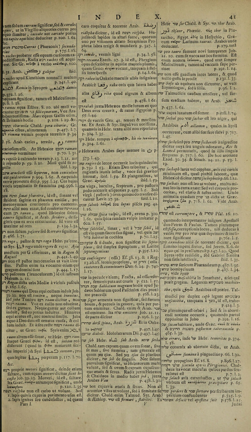 non folum currum fignificat,fed &amp; curules equos, ut in Virgilioaliquoties currus pro ;quo fumitur , caccabe aut carcabe potius ?ro capte equi hinc deducitur p. ioo. I.62. kc. tyan n333D Currus ( Pharaonis) fecunda- rius p.i7f.l.x8. «, reches probatur efle equum curforemex- &gt;editiffimum, Radix rachcis eft acqui- ere. SicGr. a verbo x-Tttrixip. 100 P 31. Arab. y2t==zj galoper ibid reo^japudKimchium nonnulli mulum explicant p. 241.1.40 f vn? i?^wi/»inSyTOpro . damin p.372.1.26. equam fignificat, tamen eft Mafculinum. p. 8.1. 38. y ramac equa Efther. 8. 10. ubi muli vo¬ cantur a’2D'n filii equarum, V ox Ara¬ bibus notiffima. Aforcequus Gallis olim, &amp;Britannis hodie p. 101. 1. 29. &amp;c. D*in tbarmila Chald. pera cibaria, Gr. ugpixhia cibus, alimentum P-45'7- E 7 D*i rimma vermis proprie terreftris p. 34 I N D 1.5-6. Arab. caries , teredo, ramma ariofumelTe. At Hebraice cdd-i ramam verminare p. 70. 1. 31. n reptile a calcando terram p. 23. 1.21. aut a rependo p. 5-9. 1* 2.1. Moli quid lit re¬ ptile ibid. I.29. arnebeth effe leporem, non cuniculum aut quid tertium p.994. 1,6f. A carpendo terrae proventu dici p. 995. 1.2f. Cur hujus vocis terminatio lit foeminina pag. 996. 1 18. 3E?X rinn fonat pharetra, id eft, fonant vel ftrident fagittas ex pharetra emillae , per metonymiam continentis pro contento nnn alibi non extat, fed confertur nr rana cum p*i ranan , quod Hebraice folum canere fignificat, at Arab. Jlridere , defa gittis quae ex arcu excutiuntur. Id vero ef maxime ad rem p. 134.I.32. p*i non folum pafcere fed &amp; errare fignificat. p.466. 1. 71. ;n roge , pafior &amp; njn raga Hebn. parcere, ut Syr. |a3 rega unde regere &amp; reges. Ajin medium perG efferimus, ut in Ragau &amp; Raguel p. 441.I.49. j?n non eft pafior mercenarius ut vult Dru- fius. Paflim enim ita vocantur etiam qui gregum domini funt p. 444. 1.17. ijnn pafcuum (leunculorum) id elt lufirum Nahum. 2. 11. jn Ragau dida urbs Media a vicinis pafcuis p. 165-. 1.65-. HDjn raama qua Deus equi collum induit Job. 39.22. non eft tonitru , neque hinnitus, led juba Tonitru ojn raam dicitur , non DDraama. Vox ex collo non educitur, fed ex gutture. Nequeguttur aut collum induit , fed eo potius induitur. Hinnitus equi acutus eft, nec tonitruifimilis. Juba equo a Deo data eft ornatus caufa, &amp;col lum induit. Et alitu re£te nrajn raama di¬ citur , ut Graec. A&lt;xp!». Syris enim raam altum efle fonat, ut Hebr. ovi rum. Itaque Grocci &lt;pop»&gt;i, id eft , jubam red¬ diderunt (quod in 4&gt;/2ev mutarunt feri bse imperiti)&amp; Syri j- 1 a comam, pro caro coquitur &amp; torretur Arab. ridhphafidcltuv , id eft nsxi ritfpha. Hu- jufmodi lapides in altari fuere, quorum uno per vilionem ablato Seraphinus Pro¬ phetae labra tetigit &amp; mundavit p. 327. 1. 64. teredo, vermis ligni p. 34.1.5-8. nqp-i recamaEiech. 27. 3. id eft, Phrygium opus deferibitur in aquilae majoris plumis, quam Graeci vocant, tanquam a ftel- lis interfperfis p.14.1.62. rakea inOnkelo maculis albis infignisut Arabice ExSj raka ovis quas latera habet alba rika quod nigrum &amp; album eft p.478. 1 61. ep*i rakak juxta Hebraeos molle lutum ex quo Deus aves creavit , &amp; ranas /Egyptias p 57.I.44. nipi de vaccis Gen. 41. tenues &amp; macilen tae. Ex Arab. &amp; Syr.lingud Vox notiffima, quamvis in Hebr. textu alibi non reperiatur p. 304. 1-35'* Hebr. tempus hu rnv XinrtTYiTC. X. 41 Hebr W for Chald. &amp; Syr. un tkor Arab, jcfi thfaur, Pbcenic. thor in Plu^ tarcho, ifgypt. in Hefychio , Grae¬ cum T«?g««• Latinum taurus. Arabes unde deducant. p. 279. tota iit? pro tauro fumunt novi interpretes Job. 21.10. cum fit vacca aut bos foemina. Eft enim nomen t7rl&gt;coive&gt;i, quod utut femper Mafculinum, tamen ad vaccam fxpe per¬ tinet p. 291.1.14. ww non efte gaudium intus latens, &amp; quod nullo geftufe prodit p.i31.1. 33. \wv Sufa ab equitatu non dicuntur, ut vult Etymologus, fed a liliis. p.96. 1.2. mty Talmudicis caudam attollere , vel fur- fum ere&amp;am habere, ut Arab. jjcuv P-.437. 1. 62. Aruy cujus luxatum eft femur p^oS.l.yq. ir\w fachal pro *in&amp;* faebar eft leo niger , qui Arabibus adlamon , quales in Syria occurrunt, cum alibi fint fere fulvi p. 717. 1-4 f- nbnty fecheleth pro mn» fecheretb a nigredine dicitur onyx feu unguis odoratus , Res &amp; Lamed permutatis, quod in illis linguis frequens p. 717. 1. 60. De hoc aromate Exod. 30. 34. &amp; Sirach. 24. 21. p. 5-3. 1. 19. -qn» fachaph larus vel cepphus, avis cui carnis minimum eft, quafi phthifi laboret, quae Hebraice dicitur nzmfacbephethp.66.1.22. ynw fachats non eft leo ut volunt, multo mi¬ nus leo in certa artate: Sed vel corporis pro¬ ceritas, vel elatio &amp; taftus animi. Unde animalia quaedam pnty qq didta ut Gr«c. iTtifacnu tf* p. 718. 1. 62. Vide Arab. p. 3O4. 1. 6l. a Hebraeum Arabes faepe mutare in P 373-!* 43- jxty rugire de leone occurrit locis quindecim p.730 1 5-3. Etiam Deo tribuitur , qui rugientis leonis inftar , voce fua graviter intonat, ibid. 1.^4. Et plangentibus, ut Graec. d$vQpos ibid. 1.5-9 virga, baculus, fceptrum , pro paftoris pedo occurrit aliquoties p.45'9. 1. 5'.^ Sub virga ( paftoris ) oves quomodo tranfire di¬ cantur Levit. 27.32. ibid. 1.11 fabotb feu lupus pifeis pag. 42 1.16. nbw fpica vulpis, id eft, avena p. 300.^11^ eft corrumpere , &amp; fnne; pfal. 16. 10. I.61. quia fpica caudam vulpis imitatur p 1 602. 1. SS- fhiw fabbelul, limax , vel a febil, id eft via quam fucco fuo fignat, vel quia 3»’ hfii habitat in cochlea P- 7°* 1 • cmrijnty &amp; fi duale, non fignificat bis feptu- plurn , fed fimplex feptuplum , ut Latine feptemge minus P*39f-^-10, confringere ( ofia) Ef. 38- 13* ^ 1 13.26.28. leonis proprium, ut pnn (ofia. conterere &amp; comminuere Dan. 6. 24. p. 74° I.17. quomodo interpretantur infignes Apoftoli ‘duoPetrus &amp; Paulus. Tamen plerumque eftf7/jG,corruptionis locus, n i fi deducas a verbis, n® pro nn^ qu»deprimere&amp;incli- nare fignificant p. 761.1. f qaisb exundans alibi de torrente dicitur, qui fjmmo impetu fertur, fed Jerem. 8.6. de equo qui in pra:liumruitp.i47.1.20. Quod Syrus redfe reddidit , fed Gabriel S.onita non fatis intellexit, ibid. 1.35-. {stk; fericum Pharand3eump.487.L 35'. pKTty bombycinum p. 4S7. 1. 34. nTiz/, vide iiDty in pecude vitium; Fradla, ad ofia refer-mafobiihd in jdnathane, arieS qui quo legitur perperam p. 117. L 7°- &amp;c. 3 , proprie moveri fignificat, deinde etiam faltare, cum equus moveri dicitur ficut lo- cujla} ob.39.23. Moveri, id eft, faltare Ita Graec. o-xoclgu» utrumque fignificat, unde tvrxx£$/x»i p. 121. 1. 35“. 713n ritfpha non eft carbo ut volunt. Sed 1. lapis quivis cujus in pavimento ufus eft. 2. lapis ignitus feu candcfadlus , ad quem Pars I. tur, femoris puta aut cruris p. fn. 1. 5'C. brun nDK/ Sabbatum magnum hodie apud Ju¬ daeos Sabbatum quod Pafchales dies proxi¬ me praecedit p. 5-68.1.23. Utv feger armenta non fignificat, fed foetum boum, &amp; pecoris in genere, quia per par¬ tum emittitur. Chald. enim &amp; Arab. uty eftemittere- Ita nbty emittere job. 21.11 de partu dicitur p. 296. 1.35- rrnty dorfi Jpina, Arab. Et in Onke¬ lo Nmisy p. 497.1.47 □'it; diaboli. Idololatrarum Dii. p.497.1.45-- rw feb Hebri sLch fah Arab. Ktvty fetha Chald. tam capram quam ovem fonat, five lit mas , five foemina , tam generale efl quam jax tfon. Sed jkx tfon de pluribus dicitur, nty Jeh de lingulis. Nec folum parvulum fignificat, utHebraeorum multi volunt, fed &amp; ovem &amp; capram cujufcun- quesetatis &amp; fexus. Radix juxta Hebraeos &amp; Chaldaeos in medio habet jod , juxta Arabes Vau p. 438.I.30. Ut? bos cujtisvis artatis &amp; fexus. Non ab praeit gregem. Legerem wvpxstsu mdsboki- ^,quia (JbUb Arabibus eft praeire. Tal- mudici per duplex caph legunt mafcocitba, tanquam a qTO,id eft,trahe¬ re p.424.1.3. plerumque eft orbari ; Sed &amp; in aborti¬ endi notione occurrit , quomodo partui opponitur in Jobo p.292. 1. 16. Dty fac an habitare , unde Graec. &amp; e-dm* Sc D'vnn ni33&amp;D pdjlorum tabernacula p. 465-. I.39. errare, inde Hebr. temeritas p. 374. 1. 5-8. itA# coturnix ab ubertate di6ba, ut Arab. fumana k pinguedine p. 66. I.30. ninibty propagines Ef. 16.8. p.896.1.27. nrapi 'vhw fcutula operis Phrygionici. Chal¬ daeus itavocat maculas quibus pardus fcu- tulatus eft p.7. 1.2. 1 bw falach avis icatarrha&amp;es , ut qbt? falaeh verbum eft x*T*ft*&lt;rvui prxchitare p. 65-. 1. 39. acumine vifusutvolunt,feda firmitate liCHTDiy perdere &amp; idB/ fervar e per feribarum im- dicitur. Chald. enim Talmud. Syr. Arab.l peritiam confunduntur p.j’25'. 1.9. &amp;iEthiop. -nty eft firmari , fi abi lir i. ExiDniPN defecit Vel apofiata fuit p.5-78.1. 25-. F Judaei