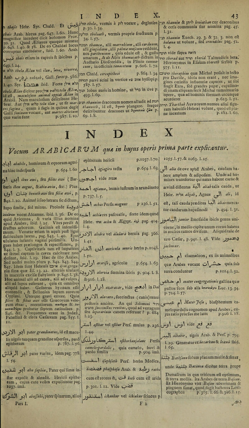 „_ « n ■ev s.. V l?bin thola, vermis a jnb vorare , deglutire. In tbajis Hebro Syr. Chald. Et o**5 thais Arab. hircus pag.647. l-6o. Hunc magnifice incedere dicit Solomon 1 rov. 30. 21 Quod TElianus quoque miratur p. 648. I.40. &amp; y8. De eo Chaldaei locus corruptus emendatur, ibid. I.60. Arat». thais etiam in capreis &amp; ibicibus p. 649.I.24. X N7n tbela/Elan vel ilan, 'hira, viverra, Arab. zebzcb, Gdl\. furet p. 9^^ ’ U . , :j 11 lui 1 pai v 1 &lt; I. 40. Syr. ] Cn^ ibid. Forte p'X xnr\ ^-gy. l.y7 nybm tholaatb, vermis proprie fru&amp;uum p. 34- 1-57- ronn thamca, alii marrubium , alii carduum^ alii gingidium , alii palm&lt;e murcum reddunt, nos parthemum , quia edule eft , &amp; guftu amarum, &amp; ab Afris thamacath didtum in Au&amp;ario Diofcoridis , in Plinio tarnna- cum, in officinis tanacetum p.606. 1. 72. pbn Chald. cercopitheci p. 864.1.34. innor» parvi acini in vertice t» flim hyffopip. thela JElan dicitur pro |Vk t-obntelu JElan, id eft , maculofum animal oppidi JElan in Arabia. Nam maculofum defcribunt He¬ braei. Aut jVtf sobo telu ilan , ut fit mar- tes fagina , quam a fagis in quibus degit Galli fouinamvocant, aut martesabietum quae variae funt P- 9^7- E 10* -jun lobus auris in homine, ut in ove p 493.1.69. D’jn thannim draconum nomen alludit adnub thannoth, id eft, plangere.^ Itaque deferibuntur dracones ut p- 69. 1.8. pjn thavmin &amp; jnnb leviathan cur draconibus &amp; cetis communia fint nomina pag. 4^ l'3r* pjn thannin Ezech. 29. 3- &amp; 32- 3* 11011 baUna ut volunt, fed crocodilus pag. yz. 1. 4. i 1 nym vide fupra nNTi Tin therad aut Tnn therid 4 almudicis beta* Hieronymus in Efaiam tboreth feribit p. 97y. 1.11. □’3in theraphim qua; Michal pofuit in ledlo pro Davide, idola non erant , nec ima¬ gines coeleftis influentiae capaces , ut fibi fingit Ezra, fed grandes pupae, cujufmo- di unam aliquam fecit Michal tumultuario opere, quae ad hominis formam utcunque accederet p.623. 1. yi. pmn ‘Tharthak Auv ac orum numen alini figu¬ ram habuilfe Hebraei volunt, quod eft pla¬ ne incertum p. 182.1, 60. inde Vocum- ARABICAKVM tpu in hujus operis prima farte explicantur. .i \_$] ababilo, hominum &amp; equorum agmi¬ na hinc inde fparfa p. 6y4-1.60 ihno awi ^ feu filiUs dvji (Bar¬ baris iben angue, &amp;abinavin, &amp;C‘.) Plur- benath awi feu fili# au&gt;i, p. §42.1.20. Animal afuo latratu fic diClum, lupo fimile, fed minus. Proinde ai/BtVx«v vocat Alcamus. ibid. 1. 36. De eo quid Avicenna , &amp; varia illius nomina apud Arabes, ibid'. 1.2y. Vites perdit &amp; frudus arborum. Gallinis eft infenfifli- tnum. Venatur etiam in aquis poft ligni fafciculum latens, pag. 843. 1. 40. Ejus ululatus infantis vagitui perfimilis. Un¬ gues habet praelongos &amp; rapaciffimos, p. 844. 1. 3. Captivitatis tam eft impatiens ut femel captum in cavea calcitrare non definat, ibid. 1. 19. H®c de illo Arabes. Sed noftri multo plura p. 842. 843. 844. 84y. Idem funt Hebrceis tzra ijtnt grega¬ ri® fer® qu® Ef. 13. 22. alternis ululant in maceriis excif® Babylonis p. 8qy. I.38. Hoc animal alii ad canes, alii ad vulpes, alii ad lupos referunt , quia ex omnibus aliquid habet. Gefnerus hyaenam efte p.1037.1.70. p.6y4-l. 63. epithetum hericii agiagiro te da vide nmx agiama, leonis luftrumin arundineto P-737-l.y. achasPerfis magnus p 2,36.1. yi. &amp;aA»A achiaves pafcualis, forte idem quod Hebr. ihn achu &amp; JEgypt. pag. 404. I.4. i alodra vel aladara hernia pag. 366. I.41. jsVs&amp;\ auricula muris herba p* 1048 l.yi, ararifo, agricol® p,6y4- 1. 63. alorvia fcemina ibicis p. 904,1. 8 &amp;916. I.28. azarazar, vide i wDal contendit, &amp; Bellonius lupum aureunfl Oppiani. Uterque gravi errore. Quin alazuro, fucandus (canis) tenui filios &amp; filias awi eife Gr®corum vete-j rum thoas ^ receiitiorurii irxvSngicc Av-j pectoris aiubitu. An ejui Solomoni 5eejr«&gt;S-«g£t? probatur feptem rationibus p.• oonn fuccinflus renibus, quod ad vertagum 846. &amp;c. Frequentes erant in Jud®a,; feu leporarium canem referunt ? p. 684 Pal®ftini &amp; circa Caefaream pag. 8yy. J. ^23. 11. ioyy.l.y7.&amp; 1063. 1.2y. C5!' alia de ove apud Arabes, caudam ha¬ bere amplam &amp; adipofam. Unde ad ho¬ mines transfertur qui nates habent carne &amp; arvinadiftentas aliahtalis cauda, ut Hebr. rrbx alijah, Agnus J* ali j id eft, tali cauda pr®ditus aliao merca¬ tor candarum hujufmodi &gt;.494. I.31. jjALa5\ jamur Ibnofaid® ibicis genus uni¬ corne , in medio capite unum cornu habens in multos ramos divifum. Aliquid tale de uro C®far, p-94i-1. 48. Vide jachmur. « cham®leon, ex iis animalibus qu® Arabes vocant quiafub terra conduntur , p. 1014.1.32. mater congregationis gallina qu® pullos fuos fub alis Luc. 13. 34. p. 724,1. y7- ^,„.c Mater J e fu , blafphetnum ca¬ melopardalis cognomen apud Arabes, cii- jus ratio prorfus me latet P-9o6 1. 18. pater grandinatus, id eft macu lis nigris tanquam grandine afperfus, pardi epithetum p. 787. 1. y6. pater varius, idem pag. 778. 1. yq. ahu faphin, Pater qui lim® in- ftar expolit &amp; abradit. Hericii epithe tum, cujus cute veftes expoliuntur pag. 1037. ima. abuffkkij pater fpinarum, aliud Pars I. \ afthar vel ofihor Perf. mulus p. 236, I.44. ofihorkaujalanc Perfis camelo-pardalis , quia camelo, bovi &amp; pardo limilis p.904. ima. ifaphfath Perf. herba Medica, iEvLiuai phafphafa Arab. &amp; ratba cum eft recens &amp;, koth cum eft arida ♦ • p, 301. I.12. Vide ^jj.sigsuv\ iskankur vel iskinhurfcincus p. F z vide ^-2 ^ vide albabir, tigris Arab. &amp; Perf. p. 794. I.29. Generatur ex bezarkan &amp; le#nd ibid. 1 6y. Bathfana folum planum molle &amp; ferax uiide Kaaa^ Batanea dicitur terra prope Damafcum in qua triticum eft optimum, &amp; terra mollis. Ita Arabes de terra Bafcan. Et Hieronymo vox Bafan uberrimam &amp; pinguem fonat, quod fugit ha&amp;enus Lexi- cographos p- 3°y’ 1,66.&amp; 306.1. ly.