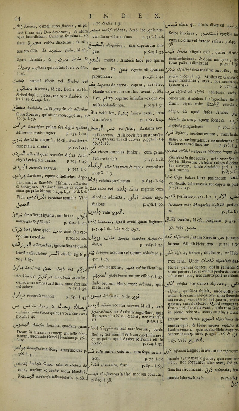 / 44 X. b ah ara, cameli aures findere , ut pa teat illum efie Deo devotum , &amp; ufum ejus interdi&amp;um. Camelus foemina in eo flatu is &gt; -gv^ bahira dicebatur \ in efl, u-- auribus fiffis. Et is8oL«.u faiba, id eft, x&amp;tos demifla , &amp; (j^j-** f“rba &amp; wafila de quibus fuis locis p. 660. INDE 1.70.&amp;682.1.3. raubfirxidens, Arab. leo, quiaprae- I.26. cameli Becht vel Bechet vel Bechati, id eft, Ba&amp;ri feu Ba¬ ctriani duplici gibbo, majores Arabicis p 87.1.17.&amp;249. l.r. \ f' bachdala faliic proprie de aljarbuo feu ardtomye, qui aliter choerogryllus , p. 1013. 1. 59. barathfwo pulpae feu digiti quibus adhaerent leonis ungues p. 735. 1.10. ^)b larich in auguriis , id efl:, avis dextra quae malieft ominis p. 20. I.34 alberid quali veredus didlus Arab. tigris a celeritate curfus p.794. 1. 29 alburdio papyrus. p.342. 1. 6. bardaun, equus clitellarius, dege¬ ner , auribus flaccidis. Hilpanice albardon &amp; burdegano. At burdo mulus ex equo &amp; alina qui prius hinnus p.234.1.32. ibid.l. 6. Plur. baradino manni: Vide borolfoetus hyaenae, aut foetus 'marmotta &amp; filii awi p. 842. 1. yi • borkfi dem quod ^ fcu cro_ codilus terreftris p.1046.1.46. albezarkan, ignota fera ex qua &amp; leaena nafci dicitur albabir tigris p. 794. 1.6y. v3i/*^ vel choph vel darthim vel murtheda camelus. cum dentes omnes orti funt, anno feptimo ve! o&amp;avo p. 7/1.36 bazazilo mannae p. 6y4. I.43 hus hus &gt; &amp; adi.*.^ richalarichala Voces quibus vocantur oves p .5-21.1.40. /f/^ykr foemina quaedam quam Deum in latrantem canem mutafle fabu¬ lamur , quomodo Graeci Hecubam p. f6r 1.20. r j bawafiro marifcae, hemorrhoidcs 366.1.4. damfuam videt eminus p.716. 1. 26. £***-t^ albogaibag , mas caprearum pm guis p. 649.1.33 mulus , Arabice faspe pro fpurio fumitur. Et bagala eft Jfpurium pronuntiare p.231. I.42 bagama de cervo, caprea , aut ibice, blande rudere cum catulos fovent p. 884. 1.5*1. |*&gt;bs bugamo infra&amp;a vox qua ca tulisabblandiuntur p.919.1.31 bakir leo, s^ib bahira leaena, item chamaeleon p.1081. 1.49 bos ferus, Arabum non¬ nullis cervus. Aliis bovis feri quatuor fpe- cies, quarumunaeft cervus p.972. 1.14 30.38.58 A bicron camelus junior , cum genua fle&amp;ere incipit p. 75. 1.28 &amp;.LXaJ3 albechila oves &amp; caprae commixtae p. 418. 1. 3. ^3jb balalito pavimenta p. 654. 1.63- belek vel iciiJb bulka nigredo cum albedine admixta , ablako niger &amp; albus p.478.1. 70. vide bannana, ligavit ovem quam faginaret p. 514.1.60. vide ob benath wardan &lt;rlx(put feu blattee p. 1065. I.35 behama hoedumvel agnum abla&amp;are p (j^Lb thaias qui hircis dives efl &amp;UU* foetor hircinus , (jmaaaau} hir cum libidine vel fcetore referre p.649. thima infignis ovis , quam Arabe manfuefaciunt , &amp; domi mulgent , ne foras pafturn dimittunt p. 522.1.31 thfeithal ibex maxime annofus, ma orvia p.974. 1 43. Golius ex Giauhari caper montanus , oryx , bos montanus fpeciesejus p.974.1.43 rV$ thfarb vel thflrb (barbaris zirbus omentum Arabibus a pinguedine lic di dnm. Syris enim i-332 tharba e adeps. Et apud ipfos Arabes j*J. thfarba de ove pinguem fonat &amp; j • V athfraba pinguefeere p. 502. 1. 71 i/V^ thfarz, morbus ovium , cum herba L&gt; mane comedunt adhuc rore madentes : E venter earum diffinditur p. 518. 1.3 .is‘5 thfaleb vulpes ex Hebraeo bjnt? fi Ut rDS^ne^°, ut in 31310 &amp; alii: oie rhililtseorum dialedio vulpes dicebar tur C3’3?pjy , unde Saalabim Tud. 1. 3 loci nomen p. 855.1 L-b-i tfaga balare inter pariendum duplicatio balatus ovis aut capras in pari p.471. I.25. 421. 1.17. abhamo mutus, &gt;/.,&lt;2.3 hahim filentium. \ ifiebahama mutum elfe p. 5.1.35 Inde brutum Hebr. nano behema , quia mutum eft. bshemotb, vide (Jv«.a31 albam vocatur corvus id efl: , avis fegarationis, ab Arabum auguribus, quia feparatus eft aNoa, &amp; abiit, nec reverfus elt p.20.1.9. ^Jfuppha animal carnivorum, pardo limile,fed notinili felis aut catelli flatura cujus pellis apud Arabes &amp; Perfas elt in Pi'etio p. 124.1.32. • talu cameli catulus, cumfequiturma trem p.75.1.15 basbafa Grasc. &lt;nx.[nti &amp; a]K^uv thananiro, furni P-^54. 1.67. perforare p. 782.1. i. foramen acus Margarita perfora ta p. 782. l.i jLio onufta, id eft, pr$gnans p. 315.: 30. vide thfamath, lutum tenue in q jo jument hserent. Alludit Hebr. tooty P- 374- 1-31 XS ihfar.a, iterare, duplicare, ut Hebi :,_5 n:ty fana. Unde ub3 thfaniath dua les vel gemini’dentes, qui in jumentis^ omni pecore, fed in ovibus praefertim cert xtate eminent, nec multo poft excidum ^aSI athfna hos dentes abjicere, ^ thfani , qui illos abjicit, unde colligitu aetas. Eos enim abjicit ovis anno fecundi aut tertio, vacca tertio aut quarto, equu quarto, camelus fexto. Quod tempus pa ftorescurioliusobfervant , quia tum fun in pleno robore , adeoque pluris fiunt Itaque tum Arab. (j^-aXo thfanionna di cuntur agni, &amp; Hebr. tzmtPD mifinim £ Latine bidentes, qux adfacrilicia exquire bantur ut acceptiores p.430. 1.28. &amp;431 I.47. Vide ^j.^33. cane, aurium &amp; caud* motu blandiri, iC^A,saA33 albasbafa talis adulatio p.681. Law.o thaifa capra in hirci modum cornuta, p.649. E 38. jj/S' thfaival languor in ovium aut caprarur membris, aut maniae genus, quae cum ac cidit, non fequuntur alias oves, fed pa fcua fua circumeunt. thfiawala, ho morbo laboravit ovis p. 524. l.j