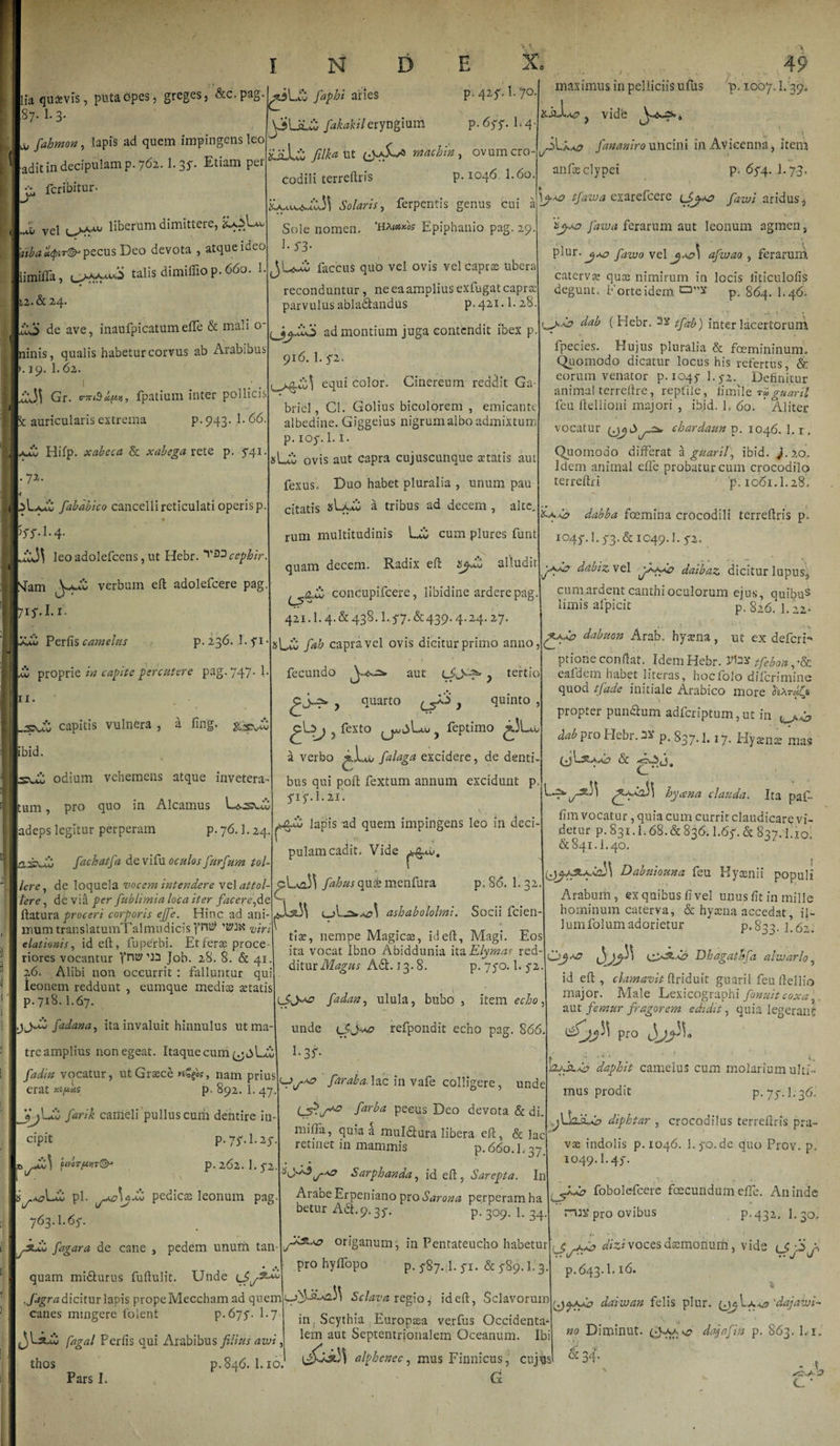 ! lia quaevis, puta opes, greges, &amp;c. pag * fahmon, lapis ad quem impingens leo adit in decipulam p. 762.1.35. Etiam per &amp; fcribitur. J, Vel ^aav liberum dimittere, :&lt;UsU* aiba u&lt;piT&amp; pecus Deo devota , atque ideo iimilTa, talis dimiffio p. 660. 1 12.&amp;24. de ave, inaufpicatum efTe &amp; mali o ninis, qualis habetur corvus ab Arabious .19. 1.62. 1 Gr. fpatium inter pollicis Sc auricularis extrema p. 943. 1. 66. Hifp. xabeca &amp; xabega rete p. $4.1. 72. ^Laa£ fababico cancelli reticulati operis p. leoadolefcens,ut Hebr. cephir. STam J.aau verbum eft adolefcere pag. 71^. 1.1. ■aau Perfis camelus p. 236. l.yi aw proprie in capite percutere pag. 747-1 11. .Sui capitis vulnera , a fing. [ibid. bpuS odium vehemens atque invetera¬ tum , pro quo in Alcamus Lacsuu jadeps legitur perperam p. 76.1.24. &amp;fachatfa de vifu oculos furfum tol¬ lere, de loquela vocem intendere vel attol¬ lere , de via per fublimia loca iter facere,de flatura proceri corporis ejfe. Hinc ad ani¬ mum translatumTalmudicis pnb 'LWK viri elationis, id eft, fuperbi. Et ferae proce riores vocantur frit? Job. 28. 8. &amp; 41. 26. Alibi non occurrit : falluntur qui leonem reddunt , eumque mediae aetatis p.718.1.67. \,yjJb fadana, ita invaluit hinnulus ut ma¬ tre amplius non egeat. Itaque cum LCC ii fadin vocatur, ut Graece «Sg«s, nam prius erat xe^s; p. 892. I.47 44 farik callleli pullus cum dentire in cipit p. 77. I.27 CtICTfWT©- P- 262. 1.5-2 pl. pedica leonum pag 763.1.65-. sJm fagara de cane , pedem unum tan faphi aries P&gt; 42$- 7° QiliGi fakahileryngium p. 675-. 1.4 'idlf: filku ut (A-xKA m ac hin , ovum cro¬ codili terreftris P-1046. I.60. Xaa«aaA^ Solaris, ferperitis genus cui a Sole nomen. 'HAmus Epiphanio pag. 29. E 5*3* faccus quo vel ovis vel caprae ubera reconduntur , ne ea amplius exfugat caprae parvulus abladtandus p. 421.1. 28. &lt;J&gt;jad montium juga contendit ibex p. 916. 1. 72» equi color. Cinereum reddit Ga- briel, Cl. Golins bicolprem , emicante albedine. Giggeius nigrum albo admixtum p. 107.1. i. sUb ovis aut capra cujuscunque artatis aut fexus. Duo habet pluralia , unum pau citatis sLaXC a tribus ad decem , alte. rum multitudinis cum plures funt quam decem. Radix eft slluoit concupifcere, libidine ardere pag 421.1.4. &amp; 438.1.77-&amp;439- 4.24.27. &amp;Lcb fab capra vel ovis dicitur primo anno, fecundo aut y tertio y quarto ^aS y quinto , 5 fexto yjwbl-Av y feptimo a verbo ^,1 au falaga excidere, de denti¬ bus qui poft fextum annum excidunt p. 717.1.21. ,&amp;Jd/ lapis ad quem impingens leo in deci¬ pulam cadit. Vide ^au. fahusqus menfura p. 86. 1. 32. ashabololmi. Socii fiden¬ tiae, nempe Magicae, id eft, Magi. Eos ita vocat Ibno Abiddunia ita Elymas red¬ ditur Magus A6t. 13. 8. p. 770.1. 72 V , maximus in pelliciis ufus p. 1007.1.39. JLaa^ fananiro uncini in Avieenna, itena anfaetlypei p. 674. I.73. \j-\o tfawa exarefeere fawi aridus, 'ijxo fawa ferarum aut leonum agmen, plur.j^ fawo ve 1 afwao , ferarum catervae quae nimirum in locis liticulofis degunt. Eorteidem C3”X p. 864. I.46. da&amp; ( Hebr. 2X tfab) inter lacertorum fpecies. Hujus pluralia &amp; foemininum. Quomodo dicatur locus his refertus, &amp; eorum venator p. 1047 1.72. Definitur animal terreftre, reptile, limile raguaril fcu ftellioni majori , ibid. 1. 60. * Aliter vocatur chardaun p. 1046. 1.1. Quomodo differat a guaril, ibid. JL20., Idem animal efle probatur cum crocodilo terreftri 'p. 1061.1.28. &lt; * dabba foemina crocodili terreftris p. I047.1.73.&amp;iC49.1.72. xXe? dabizvel daibaz dicitur lupus2 f lA&gt;a? fadan, ulula, bubo , item echo unde (JJKa? refpondit echo pag. 866 E 3S- cumardent canthi oculorum ejus, quibu5 limis afpicit p. 826. 1.22* f-fdo dabuon Arab, hyaena, ut ex defcrF ptione conftat. Idem Hebr. Dax tfebon, •&amp; eafdem habet 1 iteras, hocfolo diferimine quod tfade initiale Arabico more J*At«£* propter pun&amp;um adferiptum, ut in dab pro Hebr. bx p. 837.1.17. Hyaenae mas (jis C/‘ hycena clauda. Ita paf- fim vocatur, quia cum currit claudicare vi¬ detur p. 831.1.68. &amp; 836.1.67. &amp; 837.1.10! &amp; 841.1.40. 0^A3tA.C2J^ Dabuiouna feu Kyasnii populi Arabum, ex quibus fi vel unus fit in mille hominum caterva, &amp; hyaena accedat, il¬ lum folum adorietur p.833. 1.62. Sjfl. 0^-6? Dhagathfa alivarlo, id eft , clamavit ftriduit guaril feu ftellio major. Male Lexicographi fonuit coxa} aut femur fragorem edidit, quia legerant lJj.a.0 faraba.Uc in vafe colligere, unde far ha pecus Deo devota &amp; di. mifla, qu^a a muldfura libera eft, &amp; lac retinet in mammis p. 660. L 37 Sarphanda, id eft, Sarepta. In Arabe Erpeniano pro Sarona perperam ha betur Adi9.37. p. 309. 1. 34. origanum, in Pentateucho habetur pro hyffopo p. 787.1. 71. &amp; 789. L 3 V * , k.Aii.Ab daphit camelus cum molarium ulti¬ mus prodit P- 77.E 36. diphtar , crocodilus terreftris pra¬ vae indolis p. 1046. 1.70.de quo Prov. p, 1049.1.47. canes mingere lolent P-677- E7 fagal Perfis qui Arabibus filius awi, thos p.846. l.io. Pars I. ^jj A pro quam midurus fuftulit. Unde ,fagra dicitur lapis prope Meccham ad quemje-Ji^-AS.^ Sclava regio, ideft, Sclavorum in , Scythia Europaia verfus Occidenta¬ lem aut Septentrionalem Oceanum. Ibi alphenec, mus Finnicus, cujus G fobolefcere fcecundum efle. An inde pro ovibus p.432. E 30» &lt;j^AAb dizivocesdxmormrh, vide Lfj-Sj-* p.643. E16. ^4daivuan felis plur. (j^Laa'a'dajawi- no Diminut. dajafiti p. 863. 1.1. &amp; 34. . t C •