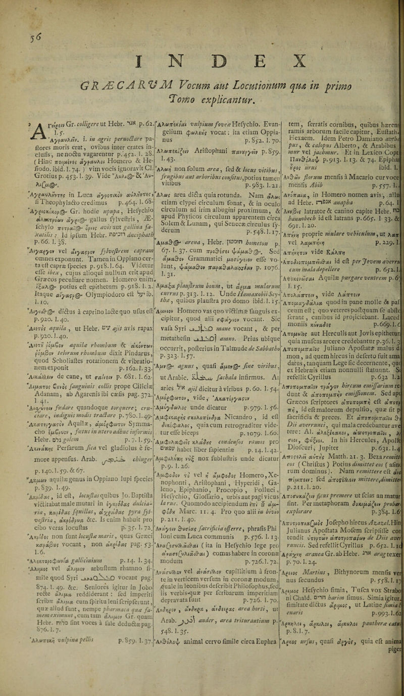 G R JE C A R V M Vocum&gt; aut Locutionum qua in primo Tomo explicantur. s A r«£2iv Gf. colligere ut Hebr. p. 62 A lA -*■ 'AypctvA&amp;v. i. /» rfgrfr pernoaare 'pa¬ llores moris erat, ovibus inter crates in- clufis, ne no£tu vagarentur p.'452. 1. 28. (Hinc Tioiy.z\a aypotvAoi Homero &amp; He- iiodo. ibid. 1. 74. ) vim vocis ignoravit CL Grotius p. 453.1. 39. Vide ’'AvA*©- &amp; ’Av- fay^xvASvrszg in Luca dyporinov aCxUvriC) fi Theophyladlo credimus p.464. 1.68- ’Ay(&gt;iox.(Kop@* Gr. hodie upupa, Hefychio dh«npvuv xygt®* gallus fylveftris , JE- Ichylo 7rzTpa7@r opvtg avis aut gallina fa- xatilis : Id i pium Hebr. duciphattt P-66.1.38. Aiyagyov vel diyxgpov Jylveflrem capram omnes exponunt. Tamen in Oppiano cer¬ ta ell caprae fpecies p. 918.1.64. Videtur elle ibex, cujus alioqui nullum erit apud Graecos peculiare nomen. Homero enim* potius ell epithetum p.918. 1.2. Itaque ctfyotrp®* Olympiodoro ell bp ib. l.xo. AiyicS-igy didlus a caprino ladle quo ufusefl p.920. I.40. ’a&lt;sta? aquila , ut Hebr. ajit avis rapax p. 920.1.40. ’A)Sts pofxQav aquila rhombum &amp; dnovruv poyftov telorum rhombum dixit Pindarus, quod Scholialles rotationem &amp; vibratio¬ nem exponit p. 162.1.33. ’AiKclUhiiv de cane, ut cralvuv p. 681. 1.62- Tujwarof /'anguinis collis prope Cilicis Adanam j ab Agarenis ibi csefis pag. 372. 1.41. ’Anyvvnv foedare quandoque torquere; cru¬ ciare, indignis modis traClare p. 780.1.49. 'Azctrepycts-cv Aquila:, djuogQurov Symma¬ cho tjuGevov, fatus in utero adhuc informis Hebr. Oba golern p. 7. 1. 5-9. Perfarum fica vel gladiolus e fe¬ more appenfus. Arab. chinger p. 140; 1.5*9. &amp; 67. awuv aquilae genus in Oppiano lupi fpecies p. 839' ^ • 49* ‘Akh18cl&lt;; , id ell, locujlasquibus Jo.Baptifta victitabat male mutari in iyxpiS&amp;s dulcia» na, KxpDxg fquillas, d%(fct$a,g pyra fyl- ‘vejiria, dxpoJpua &amp;c. Is enim habuit pro cibo veras locuftas p- 35. 1. 72. ’AKp'd8f non funt locufla maris, quas Graeci xcep«(3*ff vocant , non dxtfSus pag. 53. 1.6. *AA£!CTopo4)aiV(cJ gallicinium p. 14. 1. 34.. ’AAituo? vel «Aijwcv arbufum rhamno fi- mile quod Syri . i^oNa-P vocant pag. 874. 1. 49. &amp;c. Seniores igitur in Jobo redte «aiycc reddiderant : fed imperiti fcribx olKifxa, cum fpiritu leni fcripferunt, quae aliud funt, nempe pharmaca qua fa¬ mem eximunt, cum tam SlAi\uov Gr. quam Hebr. mbn fint voces a fale dcdudtspas. 876.1.7. v 0 ’AAct&gt;7rex&gt;i vulpina pellis p.85-9. P37. ' AAunrwidt vulpium fovea Hefychio. Evan- gelium eputfas vocat: ita etiam Oppia- nus p. 85*2. I.70 Ahuittotlgeiv Arillophani 7rxvxpydv p. 859 ]-43- nonfolum area, fed &amp; locus vitibus, ^og urus ibid. 1. AvB-mv florum menfis a Macario curvocel frugibus aut arboribus confitus,potius tamen tibiis p. 983. I. 21. ei oiAug AAus area di&amp;a quia rotunda. Nam etiam clypei circulum fonat, &amp; in oculo circulum ad irim albugini proximum, &amp; apud Phylicos circulum apparentem circa Solem &amp; Lunam, qui Senecae circulus fy derum p. 5-48.1.17. AjwotS-©- arena , Hebr.'pi3»in hometon p. 67. 1. 37. cum 7rpo94!re&lt; \pdyx3-(^\ Sed clyx^ov Grammatici y,i&lt;xdyziov elle vo- lunt, Ttxpx^xAxcxstxy p. 1076. I.31. Ayxfa plaufirum boum y Ut dgyx mularum currus p. 313. 1.12. Unde HamaxobiiScy- tha, quibus plaultra pro domo ibidJ.15- 'Auvtov Homero vas quo vi£lirtV&amp; fanguis ex¬ cipitur, quod alii c$dytov vocant. Sic vafa Syri us-J$.SQ mane vocant , &amp; per fnetathefin arnno. Prius ubique occurrit, polleriusinE a\mwte de Sabbatho p.323. 1.5-7. vAyv@r agnus , quali dyzy@r fine viribus. ut Arabie. fachala infirmus. Ai tem, ferratis cornibus, quibus hserenq ramis arborum facile capitur, Euflath. Hexaem. Idem Petro Damiano anthi pus, &amp; calopus Alberto , &amp; Arabibus mur vel jachmur. Et in Lex ico Copt i n«v3-oAo4&gt; p. 9c3. L 13. &amp; 74. Epiphaif menfis Abib p. 5-5-7. L. 'avo?xcmoc, in Homero nomen avis , allui ad Hebr. anapha P-64- 1 'Avxftif latrator &amp; canino capite Hebr. n3 hannobech id ell latrans p.66p. 1 33. &amp; 691.1.20. ’Anryvi proprie mulare vehiculum, ut Xotn vel Ac&amp;i*7ryiv&gt;} p. 2.29.1. \7tY\wixoy vide Kj4A7t»j k7ro$io7ropiirei&amp;-ui id efl per Jovem averru cum mala depellere p. 65-2.1 ' AigoKivdffou Aquilae purgare ventrem p. 6‘] 1 1S; ’AzoAamiiv, vide A«7Ttuv 'AnoMaySocAia. quod in pane molle &amp; pa ceum efl; quo veterespofquam fe abll ferant, canibus id projiciebant. Laced moniis -/faaSzg p. 669.1. 'atto^vis? aut Herculis aut Jovis epithetu quia mufeas arcere credebantur p.36.1. 3 ’ATtQnoymxlog Juliano Apoftata&amp; malus d mon, ad quem hircus in deferto fuit ama datus, tanquam Legefic decernente, qut ex Hebrtsis etiam nonnulli flatuunt. S&lt; refellit Cyrillus P-632 1.2 aries ^ ajil dicitur a viribus p.6o. 1.5-4 rpdyov hircum emifariumro dunt 6t dzQTtoyit^y emtjjionem. Sed api Graecos feriptores clitoitoynvi eft ctVoTji 7tr,, ideftmalorum depulfio, qua: nt p A yogcpcoTov, vide,- 'AJccsTjpyaysv 'AyvyJuAog unde dicatur p.979. 1.5-6. ‘AftQiKugiis c-KoAoTrzvJpot Nicandro , id efl JixzcpxAog, quia cum retrograditur vide¬ tur effe biceps p.1079. I.60. 'AjudfiAocQeig xAxJgg condenfos ramos pro 0’Niip habet liber fapiendas p. 14.1.42. ‘AuQiAvxti vy| nox fubluftris unde dicatur p.9. 1. 26. AuQoJov to vel 4 dHtu(poSog Homero,Xe¬ nophonti , Arillophani , Hyperidi , Ga¬ leno, Epiphanio, Procopio , Polluci, Hefychio, Gloffario , urbis aut pagi vicus larue. Quomodo accipiendum hrl § ccy- (piSa Mare. 11. 4. Pro quo alii/» bivio p. 21 T. ]. 40. ’Avdyuv 3-vo-lag facrificia offerre, phrafis Phi Ioni cum Luca communis p. 576. 1.13 ’Ava(\&lt;rv7Adi&amp;ou (ita in Hefychio lege pro «vaffzCyAid&amp;xi) comas habere in corona: modum p.726.1.72. Avdc-vfAQv vel dvdtriTAcv capillitium a fron¬ te in verticem verfum in corona: modum, quale in leonibus deferibit Philofophus,fed iis verbis»qua: per feribarum imperitiam depravata funt p.726. I.70. Av^^ov , olvSvigx , dvSzi^xs area horti, ut Arab.^9^&gt;.b\ an der, area triturantium p. 5-48. 1.35-. 'Av&amp;oAovJ- animal cervo flmile circa Euphra facrificia &amp; preces. Et d7ro7roy,7raToi 9- Dii averrunci, qui mala credebantur ave tere: Al. uAt^lKxxoi , d?iSQTpo7ra7oi y Aii &lt;Tioi, 4)u'|ioi. In his Hercules, Apollci Diofcuri, Jupiter p. 631.I.4 AvrogzAei oivfas Matth.21.3. Eeiaremitt eos (Chriftus) Potius dimittet eos ( afint rum dominus). Nam remittere eft dre TTzyTTZiv : fed «VoJ£^\giv mittereydimittei p. 2 11. 1. 20. 'ATToffunol^uv ficus premere utfeias an matur fint. Per metaphoram SoKiydifiiv probar explorare p. 384. 1.6 ’A7toTponixQyo6 Jofepho hircus Azazel.Hin Julianus Apoftata Mofem fcriplifle cor tendit vrzproov dirorpoTcatctir de Diis aver runcis. Sed refellit CJyrillus p. 65-2. l.ic Aodyyy) aranea G r. ab Hebr. j'1** ^r^rexer p. 70.1. 24. Aqziog Martius , Bithynorum menfis ver nus fecundus p. 5-5-8.1.1 ’'afiiyog Hefychio fimia, Tufea vox Strabo niChald. 0’in harim limus. Simiaigirur. limitate didlus d^iyog, ut Latine fimia t enaris p.993.1.62 AgKYjAoi j doniAoif dpKvAct panthera catHi P- 8.1.7 ’'a gxof urfus, qua fi d^yof, quia eft anima piger