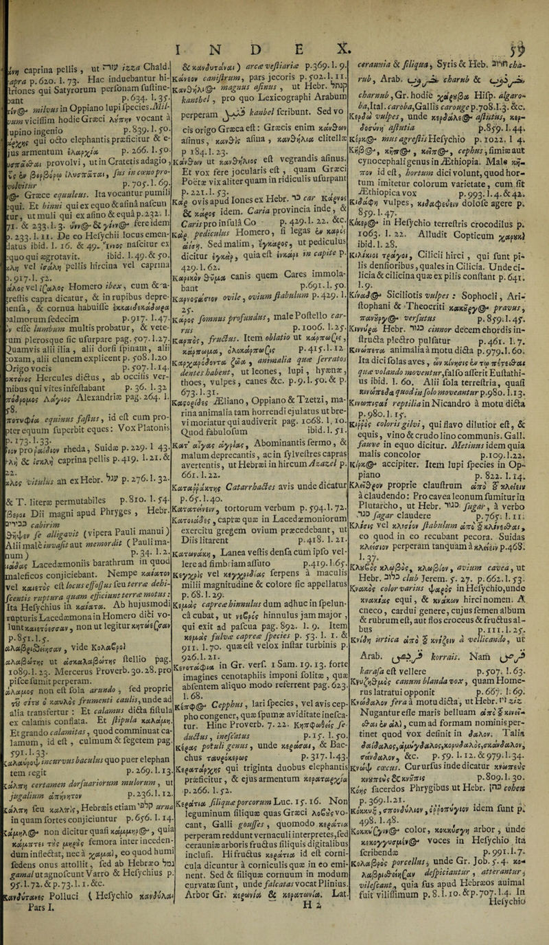 kyjj caprina pellis, ut ‘“W izza Chald \apra p. 620. 1. 73. Hac induebantur hi- Iriones qui Satyrorum perfonam fulhne- aant P-^34* 1*35* riy@. milvus in Oppiano lupi fpecies .AIA ya^zviciflim hodie Grasci AaV*jv vocant a lupino ingenio P- §39* !• S° ty/w qui 06I0 elephantis praeficitur oc e jus armentum lAocpyjoc P- 266. 1*5° jff7toic&amp;Gii provolvi, ut in Cratetis adagio \h b&gt; 3«p|3epw tKWicxxou, fas inccenopro volvitur P- ^ Graece equuleus. Ita vocantur pumili p. 221.1.53. perperam fcribunt. Sedvo cis origo Graeca eft: Graecis enim xw&amp;wv afinus, kccvS-]? afina , JCtf4v9&gt;jAitf4 clitellae p 184.I.23. &gt;KaV,Shwv ut Kxv&amp;qAiof eft vegrandis afinus. Et vox fere jocularis eft , quam Graici Poetae vix aliter quam in ridiculis uiurpant qui. Et hinni qui ex equo &amp; afina nafcun ur, ut muli qui exafino &amp; equa p. 232. 1 /1. &amp; 233.I.3. ytnv©* fere idem 3. 233.1.11. De eo Hefychii locus emen- latus ibid. 1. 16. &amp; 49^ ’iwof nafeitur ex equo qui aegrotavit. ibid. 1.49.&amp;yo. ajAfj vel Wajj pellis hircina vel caprina 3.917.I. 5*2. «Aof veliQuXog Homero ibex, cum &amp;'a- rreftis capra dicatur, &amp; in rupibus depre- lenfa, &amp; cornua habuille ixiouSiXtoSosgct ealmorumfedecim P-9U- 1-47- ,V effe lumbum multis probatur, &amp; vete¬ rum plerosque fic ufurpare pag. 507.1.27. Quamvis alii ilia , alii dorfi fpinam, alii :oxam, alii clunem explicent p. yo8.1.20 Origo vocis p. 5*07.1.14. sxtdvos Hercules didfus , ab occiiis ver- nibus qui vites infeftabant _ p. 36. I.32 oyos Adyios Alexandriae pag. 264. 1. f8. ttotvQ/oc equinus fajlus, ia eft cum pro¬ pter equum fuperbit eques: Vox Platonis p* 173* 1*33. WpropW*w rheda, Suidae p.229.1 43. •A») &amp; incAjj caprina pellis p-4T9‘ 1&gt;2I-&amp; »Xts vitulus an cxHebr. P- 276.1. 32. &amp; xotvJvTdvou ) arca vefliaria p.369.1. 9 Kcinov canifirum, pars jecoris p.yo2.1.n Kav&amp;JjA*®1 *»«£»** afinus , ut Hebr. ?nJp kanthel, pro quo Lexicographi Arabum &amp; T. literse permutabiles p,8io. 1. 5*4 r@gpoi Dii magni apud Phryges , Hebr. cabirim . . 9-i54,gi/ fe alligavit (vipera Pauli manui) Alii male invafit aut memor dit (Pauli ma¬ num) P-34* P2; toiSas Lacedaemoniis barathrum in quod maleficos conjiciebant. Nempe komoitov vel kcchros eft locus effoffusftnterra dehi fc entis ruptura quam efficiunt terra motus: Ita Hefychius in xutoirx. Ab hujusmodi rupturis Lacedaemona in Homero dici vo¬ lunt jtaisroW*», non ut legitur xjjtutQrm p. 8^1.1. o&amp;AoifigioSeiqfctv , Vide KoA#£p&lt;ft oihocftctiTyis ut dcxoiAcifidnYiS ftellio pag. 1089.I.23. Mercerus Proverb.30.28.pro pifcefumit perperam. «,Aotyos non eft fola arundo 7 fed proprie cita 0 xqcvAqs frumenti caulis7 unde ad alia transfertur : Et calamus didta fiftula ex calamis conflata. Et ftipula kxActyyi. Et grando calamitas, quod comminuat ca¬ lamum, id eft , culmum &amp;fegetem pag. 591.1.33. luAotvpo^ rncurvus baculus quo puer elephan tem regit p.269.1.13. L&amp;Attjj certamen dorfuariorum mulorum , ut jugalium durtvt)tov P- 236.1.12. tocATH) feu xfi6A?rlf,Hebrffiisetiamurna in quam fortes conjiciuntur p. 6y6.1.14. :xyyiA@* non dicitur quafi xoiyyYip&amp;, ftuia xocymu T8? yygvg femora inter inceden¬ dum infledtat, neca %ayoi), eo quod humi Pedens onus attollit, fed ab Hebrso bnj gamalutagnofeunt Varro &amp; Hefychius p 95'.I.72.&amp;P.73.I. i.&amp;c. ioivfvToives Polluci ( Hefychio xoivSvAoo Pars I. r* /1X1 l • 1* J V f Kcig ovis apud Iones ex Hebr. car^ Kotgvot &amp; napos idem. Caria provincia inde, &amp; Caris pro infula Go p. 429.1. 22. &amp;c. KcfP pediculus Homero, fi legas dv &gt;c^pcj dlevj. Sed malim, iynagos, ut pediculus dicitur quia eft tvxety tn capite p. 429.I.62. _ KotpiKov 9-VU5S canis quem Cares immola¬ bant p.691.I. 50. KMpvQfOLfiov ovile, oviumfiabulum p.429. 1. Kotpof fomnusprofundus, malePoftello car¬ rus p. 1006. I.25. KapTroV, f rudus. Item oblatio Ut tuipTea&amp;f jcctpjrcoycij oAoico4p7rwQ? p.415.1.12 Kccp^oc.poSovrec £oooc , animalia quee ferratos dentes habent, ut leones, lupi, h) tenae, thoes, vulpes, canes &amp;c. p.9.1. 50. &amp; p. 673.1.31- K#stogiits JEliano 9 Oppiano &amp; T zctzi ^ xxv&amp; rina animalia tam horrendi ejulatus ut bre¬ vi moriatur qui audiverit pag. 1068.1.10 Quod fabulofum ibid. 1. 51 KflST* otiyoi? ccyplocc, Abominantis lermo, &amp; malum deprecantis, ac in fylveftres capras avertentis, ut Hebrsei in hircum Azazel p. 661.1.22. KoiTtufftxxTw Catarrhades avis unde dicatur p. 65.1.40. Kestrtreivsiv, tortorum verbum p.594.1.72. KoiToidJec 9 captae quao in Lacedaemoniorum exercitu gregem ovium praecedebant, ut Diislitarent p.418. 1. 21. Kxraivetxyj, Lanea veftis denfa cum ipfo vel¬ lere ad fimbriamafifuto P.419.L65. Keyxpk vel xey%piJiots ferpens a maculis milii magnitudine &amp; colore fic appellatus p. 68.I.29. Ksydc c apr e a hinnulus dum adhuc in fpelun ca cubat, ut vs6 peV hinnulus jam major , qui exit ad pafcua pag. 892. 1. 9. Item Ktydis fulvce caprea fpecies p. 53. 1. I. &amp; 911. I.70. quae eft velox inftar turbinis p. 926.I. ai. Kevcr#&lt;pi* in Gr. verf. 1 Sam. 19.13. forte imagines cenotaphiis imponi folitae , quae abfentem aliquo modo referrent pag. 623 1.68. . Ki7T$@J Cepphus, lari fpecies, vel aviscep- pho congener, quae fpumae aviditate inefea- tur. Hinc Proverb. 7.22. K»j7r&lt;p&amp;&gt;0«? fe dudus, inefeatus * P-1^- i- S°- Kigas potuli genus, unde xtgcbrou, &amp; Bac¬ chus rotvgoxipug P-3I7*i.43. KtgoiTolpxw qui triginta duobus elephantis praeficitur, &amp; ejus armentum xipar ctg^ia p. 2 66. 1.52. KzgoiTKX filiquceporcorum Luc. 15.16. Non leguminum Aliquae quas Graeci Ao£ss?vo- cant, Galli gouffes , quomodo xtgdriot perperam reddunt vernaculi interpretes,fed cerauniae arboris frudtus filiquis digitalibus inclufi. Hifrudtus KigotTioo id eft corni¬ cula dicuntur a corniculis qu$ in eo emi¬ nent. Sed &amp; Aliquae cornuum in modum curvatae funt, unde falcatas vocat Plinius. Arbor Gr. xtgwtri 8i xtp#Tavloe. Lat. H 2, ceraunia &amp; fili qua &gt; Syris &amp; Heb, cha- rub, Arab, charub &amp; charnub, Gr. hodie %&lt;xg%@ot Hifp. algaro- ba7\tti\.caroba7 Gallis carouge p.708.1.3. &amp;Co KipJca vulpes, unde jcgjjJ^As®- aflutus, xip- Joevvy}' aflutia p.859. L44, idp»c©- musagreflisHefychio p. 1022. 1 4. xfo&amp; t xetTr&amp;j cephus,fimi®aut cynocephaligenus in AEthiopia. Mals ajj- ?roy id eft, hortum dici volunt, quod hor¬ tum imitetur colorum varietate, cum fit Aethiopica vox p.993.1.4.&amp;42» vliS&amp;Qy} vulpes, xi$a&lt;$ivu)&gt; dolofe agere p* 859.1.47. K/&gt;cap(®* in Hefychio terreftris crocodilus p. 1063. I. 22. Alludit Copticum ^otpml ibid. I.28. KiAtxioi Tgdyoi, Cilicii hirci , qui funt pi¬ lis denfioribus, quales in Cilicia. Unde ci¬ licia &amp; cilicina quae ex pilis conftant p. 641, }’9‘ K(votS®* Siciliotis vulpes : Sophocli, Ari- ftophani &amp; ^Theocriti xccxSgyffi pravus, 7ravSpy@* verfutus p. 859.1.45*, KivvJgoo Hebr. cinnor decem chordis in— ftrudla pledlro pulfatur p. 461. L 7, K&lt;v«Veroi animalia a motu di&amp;a p.979.1.60. Ita dicifolas aves, 6sv xlvtjffis cv itiya&amp;tu qua volando moventur,falfo afterit Euftathi- us ibid. 1. 60. Alii fola terreftria, quafi HiVM7rz&lt;Ha quo d in f olo moveanturp.&lt;f&amp;o. Li 3. Ktvcomsoti reptilia in Nicandro amotudidla p. 980.1.15. Kippflff coloris gilvi, qui flavo dilutior eft, &amp; equis, vino &amp; crudo lino communis. Gall. fauve in equo dicitur. Metinus idem quia malis concolor p.109.1.22, \Cpx@* accipiter. Item lupi fpecies in Op¬ piano . p. 822. I.14, KA«9$oi/ proprie clauftrum dito % otAdav a claudendo: Pro cavea leonum fumitur ia Plutarcho, ut Hebr, fugdr, a verbo 7^° fagar claudere P-76p l.n; KA/Vi? vel jcAfcr/ov ftabulum cItto $xAtvsc&amp;oii 9 eo quod in eo recubant pecora. Suidas jcAttViov perperam tanquam d p.468. 374 KA«€oV xAot@esx kAw/3/ov, avium cavea, ut Hebr. club Jerem. 5. 27. p. 662.1.53. Kvaxoc color varius ifxgoc in Hefychio,unde jivooxius equi, &amp; xvoixuv hirci nomen. A cneco, cardui genere, cujus femen album &amp; rubrum eft, aut flos croceus &amp; frudtus al « bus p. in. I.257 KvUsj urtica «Vo J xvt?tiv a vellicando, ut Arab. korrais. Nam harafa eft vellere p. 507. 1.63, Kyvfy&amp;yog canum blanda vox, quam Home¬ rus latratui opponit p. 667. h 69. Kua^aAov fera a motu didta', ut Hebr. ziz Nuganturefie maris belluam oitrc^xDid- S-ou cv uA), cum ad formam nominis per¬ tinet quod vox definit in SaAov. Talia SaldoiXQsfayCySxAogyXopvSuAo^ffXKtSuAQVt ffdvSoiAov, &amp;c. p.59. I.12. &amp;979.I.34. Kvw4&gt; coecus. Cur urfus inde dicatur xieamog xvismCs dCxvSuH p.809.1.30. Ko»j? facerdos Phrygibus ut Hebr. cobets p. 369.I.21. KoJtJtv!,tTTrovJuAiflv iopp67tvytov idem funt p* 498.1.48. KoxxdQyiv@r color, xoxxoeyyj arbor, unde xixoyyvffyw®* voces in Hefychio ita feribendoe p. 991.I.7* KoAojjSpo? porcellus, unde Gr. Job. 5.4* jco*- AocfiyS-mfav defpiciantur , atterantur4 vilefcantl7 quia fus apud Hebraeos auimal fuit viliiiimum p. 8.1.io.&amp;P-7°7;M- I*1 Hefychio
