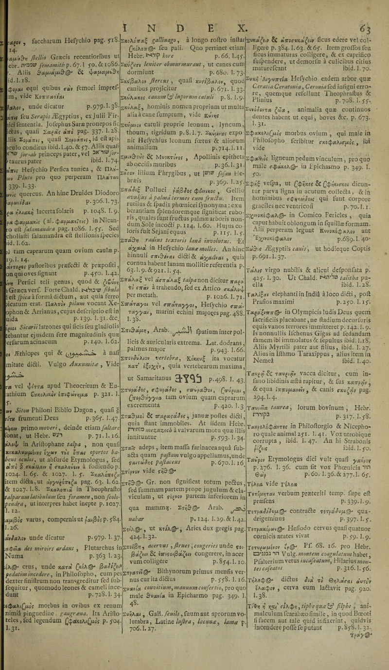 faccharum Hefychio pag. yiS-sxoAcjra| gallinago, a longo rodro indar r\ / _ r* „ i • /~v „ • . _„ #£0V , 14. otpb&amp;v fiellio Griseis recentioribus ut cbr. rvOBt? femamith p. 67.1 yo. &amp; 1086. Aliis S•c4jU&lt;«,w*9'©j &amp; id. 1.18. Qopaf equi quibus &lt;roiv femori imprcf- m, vide Komronixi p.979.1.38. QkqKo7r@* feu pali. Quo pertinet etiam Hebr. kore p. 66. I.47 'Zrivfem leniter obmurmurant, ut canes cum dormiunt ' p. 680. 1. 73. 2xtf/3#Aov fierem , quaii MirifiotAov, quod canibus projicitur p.671. 1. 33. SitvAixJtg? carnem {fi luporum catuli p.8. 1.9. foAov, unde dicatur feu Serapis iEgyptius, ex Julii Fir- lici fententia. Jofephus Sarte pronepos fic idus, quali Zagocg duo pag. 337- l-28- liis Eopotutg f quali ^cpootuig, ^ ed apis &gt;culo conditus ibid.l.40. &amp; y7- Alds 9uafi '*W for-ab princeps pater, vel 3kS Wfor- 't taurus pater ibid. 1 - 74- dnis Hefychio Perfica tunica , &amp; FlAx- uv Pluto pro quo perperam l\hdsu\ 339- L33- cavi? quercus. An hinc Druides Diodoro [j &gt;xpwiSctt p.306.1.73- ^«6 nhicAKYi lacerta folat is p. 1048. 1.9. pot (al. tyappoMTug) inNican- ro e It falamandra pag. 1086. l.yy. Sed choliadi falamandra ed ftellionislpecies &gt;id. I.62. } tam caprarum quam ovium caulas p. 19.I. 14- scvro^gf padoribus prasfedi &amp; praspofiti, 011 qui oves lignant p-4yo. E42. ovu Perfici teli genus, quod &amp; £61ny, Grascaverf. Forte Chald. tvtSlTty fibula leftj^/Yrfaformadidum , aut quia ferro picatum erat. n&lt;aAro\ pilum vocant Xe- ophon&amp; Arrianus, cujus deferiptio ed in uida p.139. I.31.&amp;C. Sicarii latrones qui ficis feu gladiolis ’giO 1 s«va*|, hominis nomen propriam ut multa E„,^„Ta animalia qu$ continuos ii 1 Iu a fanp fnmntnm virip tr.1. _ , . . , 0 ^ dentes habent ut equi, boves occ. p. 673, bi¬ tebantur ejusdem fere magnitudinis quas erfarumacinacum p.140. I.62 L» iEthiopes qui &amp; s» a nafi mitate didi. Vulgo Auxumita , Vide a r&lt;x vel r^lrrx apud Theocritum &amp; Eu- tathium SxkqMkqv i7n§u&gt;vvpx p. 321. 1. r* Siton Philoni Biblio Dagon, quafi $ rlrn frumenti Deus p. 363-. I.47. ■Iptiv primo moveri, deinde etiam [altare ‘onat, ut Hebr. p. 71.1.16 34AovJ/ in Aridophane talpa , non quafi xsjtaAvpjUjv»? tx,uv T&amp;f 07rotg oportos ba bens oculos, ut abfurde Etymologus, fed ojtto § &lt;nt«Me&lt;v ^ cnc&amp;Aeugiv a fodiendo p. 1024. 1. 6y. &amp; 1027. 1. y. S««Ao7r?^ item dida.ut apyvgo7rt£* pag. 63. 1. 62 &amp; 1027.I.8. Sjc&lt;*Ao7n« in Theophrado talparum latibulum feu foramen, non fcolo- psndra, ut interpres habet inepte p. 1027 1.12. apifiog varus, compernis ut p«»j3o\p. 5*84 1.26'. dvSxAov unde dicatur p- 979* 1- 37 des miroirs ardans , Plutarchus in alia a cane fumptum, vide Kuvyjg sKvjuvoi catuli proprie leonum, lyncum, thoum, tigridum p.8.1.7. ^Kujuvag expo nit Hefychius leonum foetus &amp; aliorum animalium p.714.1.11. sjUivB-svg Mvoktqvm , Apollinis epitheta ab qccilis muribus p. 36.1.31. £«Vov lilium Phrygibus , ut fofan He- brasis p.369. 1.2y. SnoeSi^ Polluci pd(3Sog &lt;Poivixog , Gellio avulfus a palma termes cum fruffiu. Item rutilus &amp; Ipadix phoeniceifynonyma: exu berantiam fplendoremque fignificat rubo¬ ris , quales funtfrudus palmas arboris non¬ dum Sole incodi p. 114, I.60. Hujus co¬ loris fuit Sejani equus p.ny. l.y. 'ZsrdSvi radius textoris lana, involutus. Et rixoux in Hefychio lance molles. An hinc hinnuli enftivou didi &amp; oi^x/ivoii , quia cornua habent lanam mollitie referentia p. 63.1.9. &amp;921.1. yq. STTotA^I vel dtntoeAu^ talpa non dicitur napa to endv a trahendo, fed ex Attico permetath. p. 1026.1. 71. Sararci^o* vel ffvroiTayyot, Hefychio &lt;rzeol~ rayyxiy marini echini majores pag. 488. I.38. 'LuiSoepy, Arab. Ipatium inter pol¬ licis &amp; auricularis extrema. Lat. dodrans, palmus major p. 943. 1.66 SttovJuAiov vertebra, Ko&gt;e&gt;tuf ita vocatur Kocf quia vertebrarum maxima ut Samaritanus 3TO p.498. 1. 43. S7TvpetSig, cQvpdhg , assopxB-oi, Qnv^ioti, Quopbiyyiot, tam ovium quam caprarum excrementa p. 420. 1.3 stjjS-jUc! &amp; vrxfecvgclclig^ januie podes didi, quia dant immobiles. At iidem Hebr. ninin mezuzotb a valvarum motu quas illis innituntur p. y93.1.34. st oi~g adeps, item mada farinacea aqua fub- ada quam pafiam vulgo appellamus,unde ?ot,iru£v)( pafiaceus p. 670. L 16 sHpvov vide Gr. non fignificat totum pedus, fed fu minam partemprope jugulum &amp; cla¬ viculam , ut fg^vov partem inferiorem in s4&gt;«xeAi(jjiig morbus ovium , qui male in Philofopho feribitur crxe(|)&lt;»A«rjMcV, ibi vide zwdfytv 6c *7Focrvkc*fat ficus edere vel col¬ ligere p. 384.1.63. &amp; 6y. Item grodos feu ficus immaturas colligere, &amp; ex caprifico fufpendere, utdemorfcc a culicibus citius maturefeant ibid. 1.70. Zvkv 'Aiyv7tTiot Hefychio eadem arbor qute Ceratia Ceratonia, Ceronia fed infigni erro¬ re, quemque refellunt Theophradus &amp; Plinius p. 708. I.yy. stpixSvo? ligneum pedum vinculum, pro quo male in Epicharmo p. 349. L yo. vefpa, ut Qj)»]nts Sc Qfiiyiigkqi dicun¬ tur parva ligna in acutum colleda, &amp;ia hominibus cQqKooJeig qui funt corpore graciles nec ventricofi p. 70.1.1. in Comico Pericles , quia caput habuit oblongum in fquillse formam. Alii perperam legunt KwqkQxKqv aut p.689.1.40- SoJ9-i? iEgyptiis canis, ut hodieque Coptis p. 691.I. 37. TxAig virgo nubilis &amp; alieni defponfata p. 427. I.30. Ut Chald. talitha pu¬ ella ibid. 1.28. ToiAl^ai elephanti in India a loco didi, poft Pralios maximi p. 2yo. 1.1 y. in Olympicis ludis Deus quem facrificiis placabant, ne dadiumdecurfuris equis vanos terrores immitteret p. 142.1. 9. Is nonnullis llchenus Gigas ad fedandam famem ibi immolatus d fepultus ibid. I.18. Aliis Myrtili pater aut filius, ibid. I.27. Aliusinlllhmo Taraxippus, aliusitemin Nemei ibid. I.40. qua mammse. 9-.gr- Arab. ^^3 nabar p, 124. I.29.&amp;I.42 St&lt;'a©-, ut &gt;ct/a©-j5 Aries dux gregis pag. 424.I.32. STacerviis yfirues j congeries unde $oi- fiexfriv 6c izcigoi(3oi^nv congerere, in acer vum colligere p.8y4.1.10. Numa ‘ p. 363 1.23 Aa@- crus, unde mrd CmA©* . pedatimincedere, in Philofopho, cum pesSTpfl4T«^_ Bithynorum primus menfis ver- dexter finiftrum non transgreditur fed fub- nus cur ita dictus P-55%9 1-16. f . . ? • --r f 1 dexter finidrumnon transgreditur fed fub fequitur, quomodo leones &amp; cameli ince¬ dunt p. 728.1.34. :t&lt;$otAiQfios morbus in ovibus ex renum nimia pinguedine gangrena. Ita Arido- teles , fed legendum sAifaos P- foq. F31. nus cur itaaiaus p.yy8 zuxvloi convitium, manuum confertio. pro quo male 9vxvtoo in Epicharmo pag. 349. 1. 48 Sv^Aflj;, GaM. feuils, fuum aut aprorum vo¬ lutabra, Latine lufira, lacuna, lama p 706.I. 27. Tctvgx &amp;C Toevfixv vacca dicitur, cum in- fanolibidinissdurapitur, &amp; fus jt«7rp«Vi, &amp; equa l7tyr.oy&gt;otvetv, &amp; canis ew^oiv pag. 294.I.4. Tctve&amp;oe taurea, lorum bovinum , Hebri P-3I7-l-y8. TavpiAiQbtvTig in Philodorgio &amp; Nicepho- ro quale animal 2yi. 1.41. Voxutrobique corrupta , ibid. 1. 47. An hi Strabonis pY£eu ibid.l.yo. Totvpov Etymologus dici vult quafi yxvpov p.276. I.36. cum fit vox Phoenicia Gdp p.6o. I.36.&amp;277.I. 6y. TsAid vide rsAeat verbum prssteriti temp. fxpe eft prtefens P-339-1.9. TerpxSlSvfj.©- contrade tstpdSvfi©1 qua¬ drigeminus p. 397. I. y„ T€Tp«ico'p«Jv®- Hefiodo cervus quafi quatuor cornicis cetates vivat p. y9„ j. |U£vov i'p@J Ff. 68. io. pro Hebr. in Vulg. montem coagulatumhubet „ Pfalterium vetus incafeatum, Hilarius mon¬ tes cafeatos p. 316.1.y6. T»jAg4)®- didus Slot to ©jjA^Vou dvrcv eAottyov , cerva eum ladavit pag. 920. I.38. T ctAfivi ,tipbe qua {fi filphe , ani- malculum ficarabsofimile, in quod Boeoti lifacem aut tale quid infixerint, quidvis incendere poflefe putant p. 8y8.1.32. t