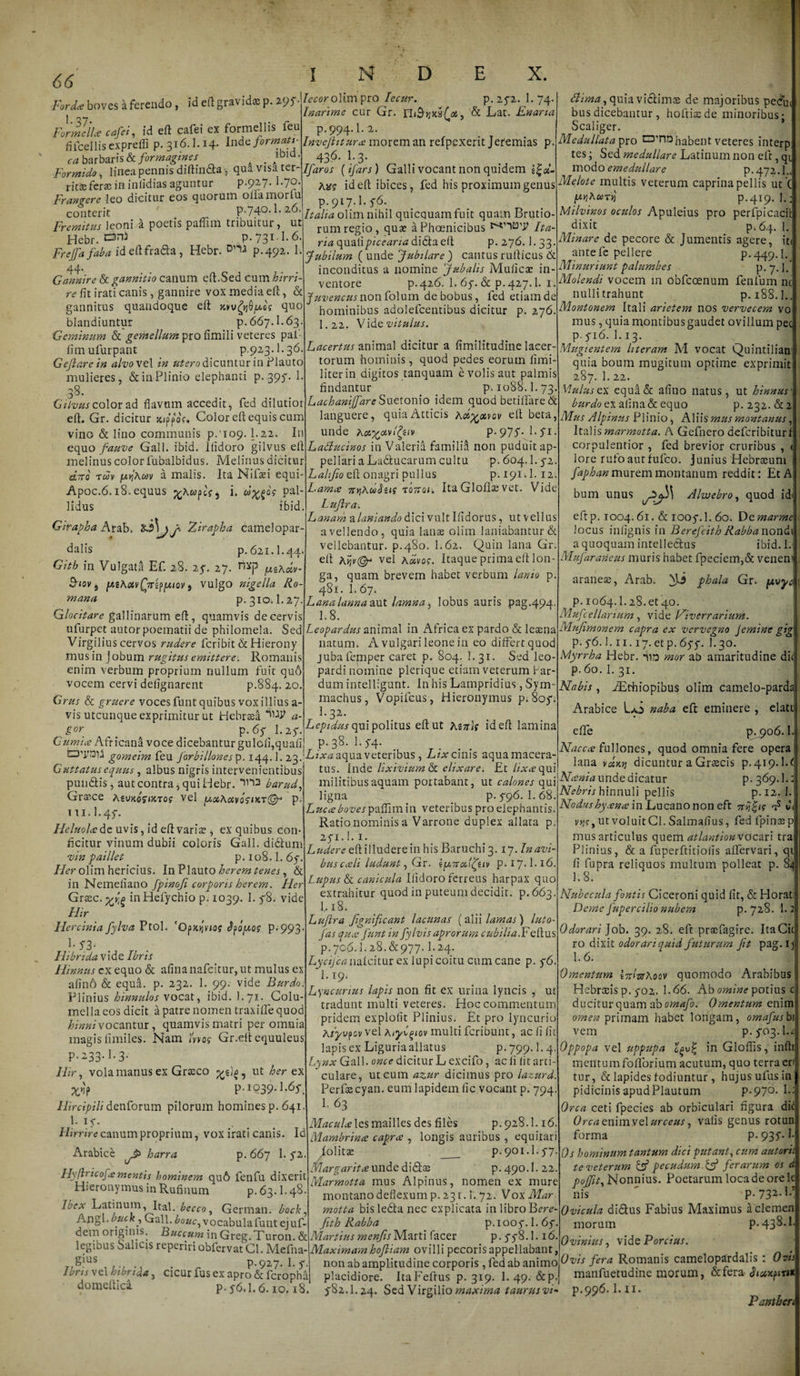 Ford* boves a ferendo, Id eft gtavld* p. »&lt;*• /«.rolim'pjo W. p.2p.l.74- Inarime cur Gr. ni&amp;Jjxs/tf-, &amp; Lat. hnana p. 994.I. 2. Inveft itura inorem an refpexerit Jeremias p 436- E 3. Ifaros (ifars) Galli vocant non quidem id eft ibices, fed his proximum genus p.917.1. ^6. ’ olim nihil quicquamruit quam brutio¬ rum regio, quae a Phoenicibus Ita- r/Gquafipft&lt;?tfrLdi6laeft p. 276.1.33 Jubilum ( unde Jubilare ) cantus rufticus 6l inconditus a nomine Jubalis Mulicae in¬ ventore p.426. 1. 6p. &amp; p. 427.I. 1 Juvencus non folum de bobus, fed etiam de hominibus adolefcentibus dicitur p. 276. I.22. Vide vitulus. Formella cafei, id eft cafei ex formellis feu fifcellis exprefli p. 316.I.14. Inde formati- ca barbaris &amp; formagines . A^1£1, Formido, linea pennis diftin&amp;a, qua visa ter- ritsefcracininlidiasaguntur p.927. I.70 Frangere leo dicitur eos quorum ollamorlu conterit p.740.1. 26. Fremitus leoni a poetis paflnn tribuitur, ut Hebr. enJ p. 731.1.6. Frejfa faba ideftfra&amp;a, Hebr. DlU p.492. 1. 44. Gannire &amp; gannitio canum eft.Sed cum hirri¬ re fit irati canis, gannire vox media eft, &amp; gannitus quandoque eft kw^Q/uos quo blandiuntur p.667.1.63 Geminum &amp; gemellum pro fimili veteres pal- fimufurpant P-92-3-^3^ Gejlarein alvove 1 in utero dicuntur in Plauto mulieres, &amp;inPlinio elephanti p.395*. 1. 38. Gilvus color ad flavum accedit, fed dilutior eft. Gr. dicitur jcippVf. Color eft equis cum vino &amp; lino communis p/109. I.22. In equo fauve Gall. ibid. Ilidoro gilvus eft melinus color fubalbidus. Melinus dicitur diro rcbv ptj/Awv a malis. Ita Nifsei equi Apoc.6.18. equus ^Awptf 5 i. pal¬ lidus ibid. Girapha Arab. Zirapha camelopar¬ dalis p. 621.I.44 Gith in Vulgata Ef. 28. 25-. 27. nxp ^ccv- Siov j /M\oivQ7rif[X(ov j, vulgo nigella Ro¬ mana p. 310.1.27. Glocitare gallinarum eft, quamvis de cervis ufurpet autor poematii de philomela. Sed Virgilius cervos rudere fcribit &amp; Hierony mus in J obum rugitus emittere. Romanis enim verbum proprium nullum fuit qu6 vocem cervi defignarent p.884. 20. Grus &amp; gruere voces funt quibus vox illius a- vis utcunque exprimitur ut Hebraea W a- „ . _ , _ £0r P-6y p z^\Lepidus qm politus eft ut KitHg ideft lamina Gumia Africana voce dicebantur guIofi,quafi| P-3§- 1-S4 Lacertus animal dicitur a fimilitudine lacer¬ torum hominis, quod pedes eorum firrii- literin digitos tanquam e volis aut palmis findantur p. 1088.1. 73 Lachaniffare Suetonio idem quod betillaredt languere, quia Atticis Ad^avov eft beta, unde p.yjp. 1.5*1. Lattucinos in Valeria familid non puduit ap¬ pellari a Ladtucarum cultu p. 604.1.5-2. Lahjio eft onagri pullus p, 191.1. 12 L.ama TrtjAwJsif toTTor. Ita Glofhs vet. Vide Lujlra. Lanam ^laniando dici vult Ifidorus, ut vellus avellendo, quia lanae olim laniabantur &amp; vellebantur, p.480. I.62. Quin lana Gr. eft Aijv®-* vel KoivQS. Itaque prima eft lon¬ ga, quam brevem habet verbum lanio p 481. 1. 67. Lanalannaaut lamna, lobus auris pag.494.. 1.8. Leopardus animal in Africa ex pardo &amp; leaena natum. A vulgari leone in eo differt quod jubafemper caret p. 804. 1. 31. Sed leo¬ pardi nomine plerique etiam veterum Par¬ dum intelligunt. In his Lampridius, Sym machus, Vopifcus, Hieronymus p.8o5*; I.32. &amp;ima, quia victima de majoribus pecu&lt; bus dicebantur , hoftiaede minoribus; Scaliger. Medullata pro habent veteres interp tes; Sed medullare Latinum non eft, qi modo emedullare p.472.1.. Melote multis veterum caprina pellis ut C p.r^wrvi p.419. 1 Milvinos oculos Apuleius pro perfpicacit dixit p, 64. 1. Minare de pecore &amp; Jumentis agere, it&lt; antefc pellere p.449.1. Minuriunt palumbes p. 7.1. Molendi vocem in obfcoenum fenlum nc nulli trahunt p. 188.I.. Montonem Itali arietem nos vervecem vo mus, quia montibus gaudet ovillum pec p. 5-16. 1.13. Mugientem literam M vocat Quintilian quia boum mugitum optime exprimit 287. 1. 22. Mulus ex equa&amp; afluo natus, ut hinnus' burdo ex afina&amp;equo P.232.&amp;2 Mus Alpinus Plinio, Aliis mus montanus, Italis marmotta. A Gefnero dcfcribiturf corpulentior , fed brevior cruribus , lore rufo aut fufco. junius Hebrteuni faphan murem montanum reddit: Et A bum unus Alwebro, quod id- eft p. 1004. 61 .&amp; 1005-. 1. 60. Demarme locus infignis in Berefdth Rabbanondx a quoquam intellectus ibid. 1. Mufarancus muris habet fpeciem,&amp; veneni o gomeim feu Jorbillonesp. 144.1.23.'Lixa aqua veteribus , Lix cinis aquamacera- Guttatus equus , albus nigris intervenientibus pun&amp;is, aut contra, qui Hebr. *in:3 barud, Graece AguaoV^To? vel pLocA&lt;xvo?iKT@r p. 111.1.45-. Heluolade uvis, id eft varia?, ex quibus con¬ ficitur vinum dubii coloris Gall. didtum vin paillet p. 108.1.65-. lier olim hericius. In Plauto herem tenes, &amp; in Nemefiano fpinoji corporis herem. Her Grasc. ylg in Hefychio p. 1039. I. 5-8. vide Hir Hercinia fylva Ptol. 'OpxtjV/oj cfyoQos- P-993 E . r Hibridavide Ibris Hinnus cx equo &amp; afinanafcitur, ut mulus ex afino &amp; equa. p. 232. 1. 99. vide Burdo. Plinius hinnulos vocat, ibid. 1.71. Colu mella eos dicit a patre nomen traxiffe quod hinni vocantur, quamvis matri per omnia magis fimiies. Nam Gr.elt equuleus p.233.1.3. Ilir, vola manus ex Graeco ut her ex X»ip p. 1039.1.65- llircipili denforum pilorum homines p. 641. I. 15-. Hirrire canum proprium, Arabice b harra Hyftricofe mentis hominem qu6 fenfu dixerit Hieronymus in Rufinum p. 63.1.48. Ibex Latinum, Ital. becco, German. bock, -ingl.ouckp Gall. bouc^vocabulafuntejuf- vox irati canis. Id p. 667 1.5*2. tus. Inde lixivium &amp; clixare. Et lix ce qui militibus aquam portabant, ut calones qui ligna p. 5-96. 1.68. Luccebovespaflimin veteribus pro elephantis. Ratio nominis a Varrone duplex allata p 25*1.1. 1. Ludere eftilluderein his Baruchi 3.17. In avi- buscali ludunt, Gr. ot(£av p.iy. I.16. Lupus di canicula Ilidoro ferreus harpax quo extrahitur quod in puteum decidit, p.663. 1.. 18. Luftra Jignifcant lacunas (alii lamas) luto- fas quce funt in fylvis aprorum cubi lia. F eftus p. 706.]. 28. &amp;977- I.24 Lycijcanaicitm cx lupi coitu cum cane p. 5-6. 1.19. Lyncurius lapis non fit ex urina lyncis , ut tradunt multi veteres. Hoc commentum pridem explofit Plinius. Et pro lyncurio Kiyvyov vel aiyC^ov multi fcribunt, ac fi fit lapis ex Liguriaallatus p. 799.1.4. Lynx Gall. once dicitur L excifo, ac li fit arti culare, ut cum azur dicimus pro lazurd. Perfaecyan. eum lapidem fic vocant p. 794. 1. 63 ALc^/^lesmailles des files p.928.1.16. Mambrince capra , longis auribus , equitari iolitae _ p. 901.1.5-7. Margarita unde didlae p.490.1. 22. araneae, Arab. phala Marmotta mus Alpinus, nomen ex mure montano deflexum p. 231.1. 72. Vox Mar motta bis ledta nec explicata in libro Bere- fith Rabba _ p. 1005-. 1.65- dem originis. Buccum in Greg.Turon. &amp; Martius men/is Marti facer p. 5-5-8.1.16 legibus Salicis repeririobfervat Cl. Mefna- gius . p. 927. 1.5-. Ibris vel hibrida, cicur fus ex apro &amp; fcropha domeltici P-5*6.1.6.10.18. Maximam hofliam ovilli pecoris appellabant non ab amplitudine corporis, fed ab animo placidiore. ItaFefrus p. 319. 1. 49. &amp;p 5-82.1.24. Sed Virgilio maxima taurus vi- Gr. fxvyc p. 1064.1.28.et40. Mufcella rtum, vide lAverrarium. Mujimonem capra ex vervegno Jernine gig p. 5-6.1.11.17. et p. 65-5-. I.30. Myrrha Hebr. *ud mor ab amaritudine di&lt; p. 60. 1. 31. Nabis , .ZEthiopibus olim camelo-parda Arabice Lo naba eft eminere , elati eflfe p. 906.1. Nacca fullones, quod omnia fere opera lana dicuntur a Grascis p.419. l.f Nania unde dicatur p. 369.1.: Nebris hinnuli pellis p. 12. 1. Nodushyana in Lucano non eft -n^tg C v&gt;jf,utvoluitCl.Salmafius, fed fpinsep mus articulus quem atlantionvocari tra Plinius, &amp; a fuperftitiolis affervari, qi fi fupra reliquos multum polleat p. 84 1.8. Nubecula fontis Ciceroni quid lit, &amp; Horat Deme fupercilio nubem p. 728. 1.2 Odorari Job. 39. 28. eft pracfagire. ItaCic ro dixit odorari quid futurum Jit pag. ij 1.6. Omentum WAtssAoqv quomodo Arabibus Hebrccis p. 5-02. 1.66. Ab omine potius c ducitur quam ab omafo. Omentum enim omen primam habet longam, omafus bt vem p. 5*03.1 Oppopa vel uppupa in Gioflis, inftt mentum foftbrium acutum, quo terra en tur, &amp; lapides fodiuntur, hujus ufus in pidicinisapudPlautum P-97°- E: Orca ceti fpecies ab orbiculari figura dif Orca enim vel urceus, vafis genus rotun forma p. 93$*- 0s hominum tantum dici putant, cum autorii te veterum &amp; pecudum &amp; ferarum os d poffit, Nonnius. Poetarum loca de ore lc nis ' P- 732-E* Ovicula didus Fabius Maximus aclemen morum P-438-1 Ovinius, vide Porcius. Ovis fera Romanis camelopardalis: Ovis manfuetudine morum, &amp;fera Siuxpiu* p.99 6.1.11. Pantheri