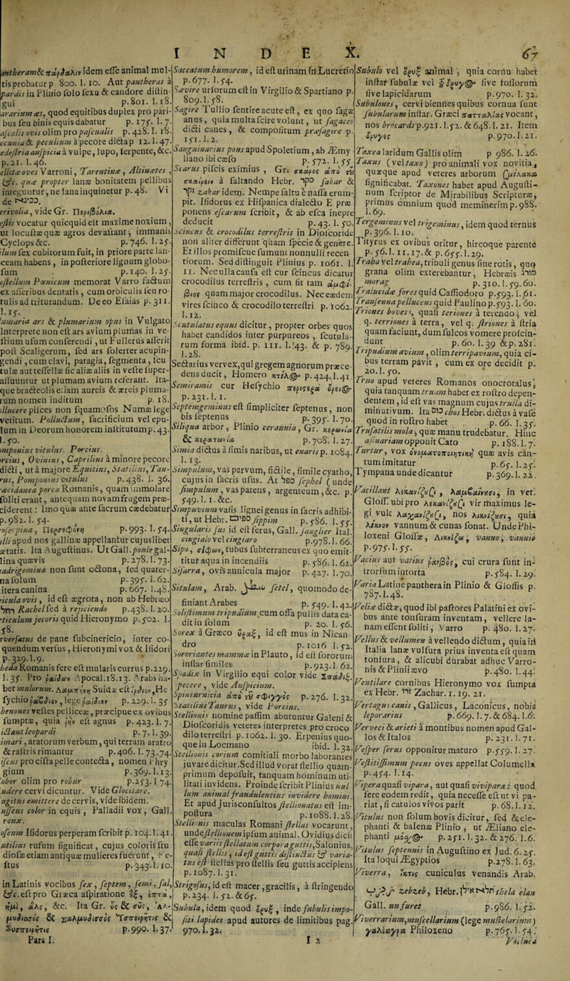 'tHtherawifk.TCcLfis&amp;Kiv idem efle animal mul¬ tis probatarp 800. 1.10. Aut pantheras a pardis in Plinio folo fexu &amp; candore diftin- gUi p.801. 1.18. arariumas, quod equitibus duplex pro pari¬ bus feu binis equis dabatur p. 175*. 1-7- afcalis ovis olim propafcualis p. 428.1. I'8 ecuniafc peculium a pecore didlap 12.1- 47 edejiriaaufpicia a vulpe, lupo, lerpente, &amp;c. p. 21. 1. 46. elhtaoves Varroni, Tarentina, Altinates , &amp;c. qua propter lanas bonitatem pellibus integuntur, ne lana inquinetur p.48. Vi de t-ooiL erivolia, vide Gr. nipiftoAia. ejlis vocatur quicquidelt maxime noxium ut locuftasquas agros devaltant , immanis Cyclops&amp;c. p. 746. 1.25-. ?Ium fex cubitorum fuit, in priore parte lan¬ ceam habens, in pofteriore lignum globo- fum p.140. 1.25- ojlelium Poenicum memorat Varro fadtum ex afferibus dentatis, cum orbiculis leu ro tulisad triturandum. Deeo Elinas p. 311. 1-if. 'urnaria ars &amp; plumarium opus in Vulgato Interprete non eft ars avium plumas in ve- ftium ufum conferendi, ut Fullerus allerit poli Scaligerum, fed ars folerter acupin- gendi , cum clavi, patagia, fegmenta, ficu tuite autteffellse lic alias aliis in vefteliiper- affiiuntur ut plumam avium referant. Ita¬ que bra&amp;eolisetiam aureis &amp; asreis pluma¬ rum nomen inditum p 18. Mucere pilees non fquamofos Numaslege vetitum. Polludum, facrificium vel epu¬ lum in Deorum honorem inltitutump. 43. I. yo. imponius vitulus. Porcius. &gt;rcius, Ovinius, Caprilius a minore pecore didli, ut a majore Equitius, Statilius, Tau¬ rus, Pomponius Vvtulus p.43^ 1» 3^ •acidanea porca Romanis, quam immolare folitierant, antequamnovamfrugempro¬ ciderent : Imo quae ante facrum caedebatur p. 982.1. 5-4. ■ojerpina, h^ffs^ovtj p. 993.1.3-4 illi apud nos gallinae appellantur cujuslibet aetatis. Ita Auguftinus. Ut Gall gal lina quovis p.278.1.73. tadrigemina non funt cdtona, led quater- nalolum p.39f. I.62. itera canina p.667. 1.48. -iculaovis, id eft ogrota, non ab Hebraeo Sm Rachelftd a rejiciendo p.438. 1. 20. viculum jecoris quid Hieronymo p.;f02. 1. f8. sverfatus de pane fubcinericio, inter co¬ quendum verius , Hieronymi vox &amp; Iiidori p. 329.I.9. heda Romanis fere eft mularis currus p.229. ].3y. Pro poti'Juv Apocal.18.13. Arabs ha¬ bet mulorum. ASuido eft IjJiov,He fychio pxGJtov, lege pxlJiov p. 229.1. 3) henones veltes pelliceo, procipue ex ovibus fumpto, quia eft agnus p.423.1.7. i dant leopardi p. 7.1.39. imari, aratorum verbum, qui terram aratro &amp;raltris rimantur p.406.1. 73.74. ifcus pro cifta pelle conte&amp;a, nomen i hry giuin _ p.369.1.13 !obor olim pro robur p.253.1 74. udere cervi dicuntur. Vide Glocitare. ugitus emittere de cervis, vide ibidem.' ujjfeus color in equis , Palladii vox , Gall roux.- ofeurn Ifidorus perperam feribit p. 104.1.41 utilius rufum fignificat, cujus coloris ftu diofo etiam antiquo mulieres fuerunt, t' e- Itus p. 343.1.10. Saccatum humorem, id eft urinam iri Lucretio p.677. 1-54- Savire uriorum eft in Virgilio&amp; Spartiano p 809.1.3-8. Sagire Tullio fentire acute eft, ex quo fago anus, quia multa fcire volunt, ut fagaces didi canes, &amp; compolitum prajagire p 15-1.1.2. Sanguinarius pons apud Spoletium, ab iEmy lianoibicofo p. 572. 1.5-5- Scarus pifeis eximius , Gr. exoepog Uno Ai cx-xipiiv a faltando Hebr. “'p0 fakar &amp; T1 zakar idem. Nempe faltu e iialfa erum¬ pit. Ilidorus ex Hifpanica diale&amp;o E pro ponens efcarum feribit, &amp; ab efca inepte deducit p. 43. 1.5-0. scincus &amp; crocodilus terrejlris in JDioicoride non aliter differunt quam fpecie&amp; genere. Et illos promifeuefumuni nonnulli recen tiorum. Sed diftinguit Plinius p. 1061. 1. 11. Nec ulla caufa eft cur fcincus dicatur crocodilus terreftris , cum lit tam Uptyt- @ios quam major crocodilus. Nec eodem vires fcinco &amp; crocodilo terreftri p. 1062. I.12. Scutulatus equus dicitur, propter orbes quos habet candidos inter purpureos , fcutula- runi forma ibrd. p. m. L‘43. &amp; p. 789. I. 28. Sedar ius vervex,qui gregem agnorum praece¬ dens ducit, Homero p. 424,1.41. Semiramis cur Hefychio jrepifeg* 2pu&amp; p.231.I.1. Septemgeminus eft fimpliciter feptenus, non bis feptenus P-39T I.70. Siliqua arbor, Plinio ceraunia, Gr. 8c QOtTCOUX p. 708. I.27 Simia didus a limis naribus, ut enaris p. 1084. J. 13. Simpulum, vas parvum, fidile, firnile cyatho, cujus in facris ufus. At bao fephel ( unde5 fimpulum , vas patens, argenteum ,&amp;c. p. 5-49.I.1.&amp;C. Simpuvium vafis lignei genus in facris adhibi¬ ti, ut Hebr. ^^ Jippim p. 5-86. 1.5-5-. Singularis Jus id eft ferus, Gall. Janglier Ital. cingi alo v el cingiaro p.978.]. 66. Sipo, clipuv, tubus fubterraneusex quo emit¬ titur aqua in incendiis p. 5-86.1. 62; Sifarra, ovis annicula major p. 427. I.70. Situlam, Arab. fetel, quomodo de¬ finiant Arabes p. 5-49. 1.42. Solijiimum tripudium .cum offa pullis data ca¬ dit in folum p. 20. 1.5-6. Sorex a Graeco wga|, id eft mus in Nican dto p.1016 1.5-2. sororiantes mamma in Plauto, id eft fororum i inftar fimi.les p. 923.1. 62. Spadix in Virgilio equi color vide j7rddi% pecere, vide Aujpicium. Spinturnicia x7to tH cQiyycg p. 276. I.32. ‘StatiliusTaurus, vide Porcius. Stellionis nomine paflim abutuntur Galeni &amp; Diofcoridis veteres interpretes pro croco dilo terreftri p. 1062. 1. 30. Erpenius quo¬ que in Locmano ibid. I.32. Stellionis corium comitiali morbo laborantes juvare dicitur.Sed illud vorat ftellio quam¬ primum depofuit, tanquam hominum uti¬ litati invidens. Proinde feribit Plinius nui lum animal fraudulentius invidere homini. Et apud jurisconfultos Jlelhonatus eft im- , poftura p. 1088.1.28. Stellionis maculas Romani Jlellas vocarunt, undefieUionem ipfum animal. Ovidius dicit effe variisJlellatum corpora guttis, Salonius, quafi flelhs , ideflguttis dijlindus &amp; varia¬ tus cjl ftellas pro ftellis feu guttis accipiens p. 1087.1- 31. 0 in Latinis vocibus fex, feptem, femi, fal, Strigofus, id eft macer, gracilis, a ftringendo ^srV.eftpro Giaeca afpiratione \tvx%, p. 234. 1. 5-2. &amp; 65-. » &amp;c- ^ta ^ AA‘ Subula, idem quod o§u|, inde fubulisimpo- (xvJiosog zoihfAvJtirffos Teneipying Sci flti lapides apud autores de limitibus pag. SWTTSipijT»} p.990. 1. 37‘ 970.1.32. Pars I, f 5 Subulo vel o£vf animal , quia cornu habet inftaf fubulae vel live loliorum live lapicidarum p. 970. 1.32. Subulones, cervi biennes quibus cornua fune fubularum inftar. Graeci 7r*TToc\lxg vocanr, nos brocardsp.921.1.5-2. &amp; 648.1. 21. Item p, 970.1.21. Taxea laridum Gallis olini p 9S6. I.26. Taxus ( vel taxo) pro animali vox novitia4 quaeque apud veteres arborum QuIaolka fignificabat. Taxones habet apud Augufti- num feriptor de Mirabilibus Scripturae, primus omnium quod meminerim p. 988. I.69. Tergeminus vel trigeminus, idem quod ternus p. 396.1.10. Tityrus ex ovibus oritur, hircoque parente p-5-6.1.11.17.&amp; p.65-5-.I.29. TrahayeX trahea, tribuli genus line rotis , quq grana olim exterebantur, Hebraeis a*np ^ morag p. 310.1.5-9.60. i raiucidee fores quid Cafiiodoro p.593.1. ,6i- Tranjennapellucensquid Paulino P-5'93• 1. 60. Triones boves*, quali teriones a terendo \ vel q. terriones a terra, vel q; JIriones a ftria quam faciunt, dumfulcos vomere prolcin- ^unc j p. 60. I. 39 &amp;p. 281I c ripudium avium, olim terripavium, quia ci¬ bus terram p&amp;vit , cum ex ore decidit p. 20.1.5-0. Truo apud veteres Romanos onocrotalus^ quia tanquam truam habet ex roftro depen¬ dentem , id eft vas magnum cujus trulla di- minutivum. ItachosHebr. dictus a vafe quod in roftro habet , p. 66. I.35-I Trufatilismola, quae manu trudebatur. Hinc afinariam opponit Cato p. 188.1.7! Turtur, vox qute avis can~ tumimitatur p. 65-. 1.25-1 Tympana unde dicantur P-3^9-1- 22. ITacillant AiKocv x*o &gt; XotpcQxivaci, in vefl Gioff. ubi pro AtxoiM 1 Qs(\ virrhaximus le- gi vulc A*%otvlQgQty nos aquia Aikvov vannum &amp; cunas fonat. Unde Phi¬ loxeni Glolfse , AiKvi^ot} 9 vanno, vannio* p.975-. 1.5-5-. Vacius aut vatius pxr(3ogf cui crura funt in- trorfum intorta p. 5-84. 1.29. Varia Latine panthera in Plinio &amp; Gloffis p, 787.I.48. Velix difita*, quod ibi paftof-es Palatini et ovi¬ bus ante tonfuram inventam, vellere la¬ nam effent foliti, Varro p. 480. 1.27« Vellus hveilumen a vellendo didtum, quiairt Italia lanxvulfura prius inventa eft quam tonlura, &amp; alicubi durabat adhuc Varro¬ nis &amp; Plinii ©vo i&gt;.480. I.44: Ventilare cornibus Hieronymo vox ftimpta ex Hebr. Hi Zachar. 1.19. 2.1^ Pertagus canis , Gallicus, Laconicus, nobis leporarius p. 669. I. 7. &amp; 684.1.6; Verveci &amp; arieti a montibus nomen apud Gal- los&amp;Italos p. 231.1.71. Vefper ferus opponitur maturo p.5'5'9.1. 27. Vejlitijfimum pecus oves appellat Columella p.45-4. I.14. Vipera quafi vipara, aut quafi vivipara: quod fere eodem redit, quia neceffe eft ut vi pa¬ riat, fi catulos viVos parit p.68.1.12. Vitulus non folum bovis dicitur, fed &amp;e!e- phanti &amp; balenae Plinio , ut iEliano ele¬ phanti p.2fi. I.32. &amp; 276. 1.6. Vitulus feptennis in Auguftino ex Jud. 6.25-. Ita loqui iEgyptios p.278.1.63. Viverra cuniculus venandis Arab. Z-ebzeb, Hebr. thela elan Gall. un furet p.986. I.5-2. Viverrarium,mufcellarium (lege mufletarium) y*AUypoc Phi-loxeup p. 765-. 1.5-4.' VtcluU