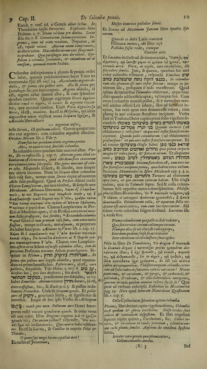 Ezech. 7. verf. 16. a Graecis aliter leBm. In Theodoreto lapfus Interpretis. Explicatur locus Nahum. 2. 7. Unum verbum pro duobus. Locus Efa. 60. v. 8. Columbarum fummapernicitas. In- ti rimis , cum ad nidos revolant. Trepidam , «i <?/?, rapide volant. Alarum unam comprimunt4 fit altera volent. Ilius tabellaridrum vice fungi mul¬ tisprobatur. Quot parafangas una die volent. Jzpi- Jlolam a columba ferendam , columbam ad id emijfam, quomodo vocent Arabes. Columbae deferiptionem a plumis 6c pennis ordiri lubet, quarum pulchritudinem Sacer Vates ita commendat Pfal. 68. verf. 14* Ala columba argento ob- duBa , <£X penna ejus pallore auri. Ala & penna pei OmJotfjr hic pro toto corpore. id eft, argenti inftar fumme albas, & cum fplendore quodam candidas. Quippe argentum Grace iov dicitur nufcc t6 ol^ycv, t0 A£uk.cv' & argentea vocan¬ tur, quas maxime candent. Unde Poeta ccgyvpont^oe ©6T<f, id eft, MvK07nsc. Ita eft in Hefiychio, qui idem explicat Aevx<x fXyxsx ixpfctv, & kAZneidos libro octavo s— argentem anfer, tefte Servio , eft epithetum coloris. Corvus quoque tum ales erat argentea, cum columbas aequabat albedine. Ovidius Metam, lib. 2. Fab. 7. Nam fuit hac quondam niveis argentea pennis Ales , aquar et totas Jine labe c olumbas. In columbis enim quaedam funt maxime albos. Var¬ ro^ De reruflicaXib. 3. cap. 7. Alterum genus illud co¬ lumbarum efl clementius, quod cibo domejhco contentum intra limina janua fcletpafci. Hoc genus maxime efl colo¬ re albo. Aliquando fcilicet, & alicubi, non femper hec ubivis locorum. Nam in Gracia albae columbas fero vifq funt, nempe cum Xerxis copiae ad montem Atho funt profligatae. Quod in Perficis diferte tradit Charon Lampfacenus, qui tum vivebat, & fci ipfit ante Herodotum. Athenam libro nono, Xapwv J[‘ 0 Axyfx- Xv.vqs , bv rofi Ilg^ca^o!? TTfp) & JiciQ$-ot?iVT& fparS 7tfi ta6w, yf>d<pn t«utx <CK«.) Agyjta) ^p^pod rore Trpwrov «Ve^vojj £<|>aW<*v-j *cjrpoTspov si yiy\offou. CharonLampfaccnus z# Pei- ficis Mardonio , & de Perfico exercitu ad mon¬ tem Athoprofurato, hac fcribit\ Ea candida columba *c Graecos primum vifa funt, antea nulla fmjfent, nempe in Gracia^ non ufquam, ut perperam ibi habet Interpres. MSlianus in Hariis lib. i.cap. 17. X#p«v eft o' ^rep* t ’a5« (paoijva* Trspjygpaf Aevxaf Aej/si, ore onaC&x xnuhovTO ai r n?§<rwv rp»s- f£<? 7rXfxy.xy.xnsffxi t1 ^aOw. Charon 'iw# Lampface- HUS affer it circa Athon vi fax ejfe columbas albas, cum ibi perierunt Perfarum triremes Athon pr ater legent es. Se¬ quitur in pfaimo, rmro&o» ut penna ejus pallore auri fupple obduBa , quod repeten¬ dum ex priore hemiftichio. Pallore auri, id eft, auro palloris, feupallido. Tale Habac.l.verf. 6. £3*0 ^ denfitas luti , pro denfitatis , feu **)Xinn IXinOH CDlpDD, praedicatum pro fubjedto, ut hic habet Kimchius. Aurum vocatur pnn charutSj id eft, tterraeffojfum, hic, &cZach.q>.v.^. Scpaftim inSo- lomonis Proverbiis. Unde fit Gracumyf veros. Et pallor auri eft plp*Y , geminatis literis , ut fignificatio ftt intenfior. Itaque ab hoc ipfo Verbo fit zASthiopum '<DC$: wark pro auro. Pallorem auri Graeci Inter¬ pretes re£te vocant yhw femora ^pocA. Is enim verus eft auri color. Hinc Diogenes rogatus A<« ro %fvQov ^Awpov tc!\'j Cur durum palleat? refpondit, jOti 7toa- AsUi%ti T»? l7ri€«A6uo»'T«?, Quia multos habet infdiato- res. Ita eft in Laertio , & Catullus in nuptiis Pelei cr Thetidos, O /rfpc' magis lurore expalluit auri! Et rurfus ad Juventium, De Columba pomis. 16 Hofpes inaurata pallidior fatua. Et Statius ad Maximum Junium libro quarto Sjl- varum. Quando te dulci Latio remittent Dalmatae montes, ubi Dite vifo Pallidus fojfor redit, erutoque Concolor auro. Et Lucianus m Gallo ad divitem avarum, os 5^pu7rver , f(fj c/uoi& ylyvx to yju>y.& tw ypvtru f 7rpfl- CiTKKcig auTM. Plora, ac vigila) auro intabefeens, illi fias colore fmilis. Jam, fi quaeras, quorfum hic auri color columbis tribuatur , refpondit Kimchius TQW io 10 3° 40 ano nanvDW mu njvn , /» w alis plumam ejfe auri infiar flavam: nempe in ju¬ niorum alis , poltquam e nido exceflerunt. Qiiod ipfum de turturibus Talmudici obfervant, atque hinc difei quando ad facrificia aptae, vel ineptae fint. Cum enim e columbis nonni fi pullos, & e turturibus non- nifi adultas offerri Lex jubeat, illos ad facrificia in¬ eptos, has vero aptas tum demumefie volunt, cum plumq in auri colorem flavefeere incipiunt. Verba funt in Tractatu Cholm capitis primi folio vigefimofe- cundob. \HD\SD 12’m^D DHinn ^0’XD ia»mwa ruv ua Quando turtures ( ad oblationem ) rechz funt ? ex quo auri infiar flavefeere in¬ ceperunt. Quando pulli columbarum ( ad oblationem) profani funt i ex quo auri infiar flavefeere inceperunt. Et ad vocem Glojfa habet j£U 3HD DO*n?Dl D^1“U quia penna corporis magna £x rubra fiunt, £x flava ut aurum. Et aliquanto ante , d>£ud prnnDW an»vn n^^nn n^lV D)y20DW Initiumfiavedinis eft, cum auri in* ftar flavefeere incipiuntpenna, quas habent circa collum. Ita etiam Maimonides in Iffure Mixbeach cap. 2). §.2. nrwD onw omnm <2^ oblationem apta funt, <?v ^0 aureum colorem habent. Ubi Glojfa eadem, quae in Talmude fupra. SedSc colla colum¬ barum Soli oppofita aureo colore fplendent. Philofo- phusin\ibi’0 De coloribus, ‘Ch r Trspjrepwv Tprt^jjAoq^tf t yJarwv oi fctt^ayyo} QoUvqvtoii yavcouSus, ^ cpwTfl? av<5S>tA«juV«* Columbarum colla, & aquarum flilla vi¬ dentur ejfe aurei coloris ^ tum cum lux repercutitur. Alii folum variis coloribus fulgere feribunt. Lucretius lib. 2.verfu8oo. Pluma columbarum quo pafto in Sole videtur 9 cervices circum collumque coronat. Namque alias fit uti claro fit rubra pyropo , Interdum quodam fenfufit utivideatur Inter coeruleum virides mifcere fmaragdos. Philo in libro De Temulentia, Tov duyiva ^ iv Yih.1xr.0tAS xvyxTs a’ ivorfxs yofixs ypooyXTCov «A- hXTTovTX Uixs j $ £%) 4>om>cai/ , , 7tvp07tGV rs, «vS-pciJtoeiJf? , tn ts w^pcv , ^ £|>v3-pov, «»v04 7TXVTQ$X7rX iq/H yfUfAXTX , WV JCAjjVgi? p'«J<ov oiTTouvyycrcvtTxi. Vidiflineunquam columba cervi¬ cem ad Solis radios in fexcentos colores variatam ? Nonne puniceum, caeruleum, & pyropi ^ & carbunculi, O* pallidum, & rubrum^ & alios habet colores omnigenos , quorum ne nuda quidem nomina referre facile fit ? Quae pene ad verbum exfcripfit Euflathius in Hexaemeron pag. 29. Afero apud Senecam Naturalium Qgafi tonum lib. 1. cap. 7. Colla Cytheriacae fplendent agitata columba. Plinius, libri decimi capite vigefimo fexto, Columbis in efl quidam & gloria intellectus. Noffe credas fuos colores & varietatem difpofitam. Et libri trigefimi feptimi capite quinto , Carchedonii, 8cc. Colore in- 70 certi, C7 virentium in caudis paVonum , columbarum- que collo plumis fimtles. Aufonius de anatibus Epiflola tertia, Iricolor vario pinxit quas pluma colore 5 Collum colutnbis amulas. (B) 3 Sed 70 60