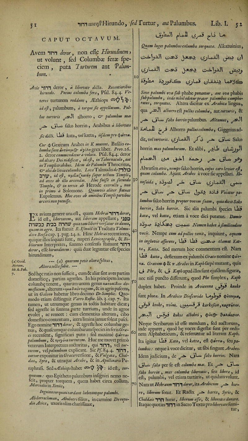 JI ininoneftMirando, feci Turtur, Palumbus. G A P U T OCTAVUM. Avem mi deror, non efle Hirundinem > ut volunt, fed Columba ferae fpe- ciem , pota Turturem aut Palum¬ bum. Avis mi deror , k libertate diSla. Recentioribus hirundo. Potius columba fera, Pfal. 84.4- ^?~ i er es turturem reddunt , ALthiops td ejl, palumbum, i Jic appellatum. Pul¬ lus turturis alhorro , CA palumbus mas ^ (3*Lvw fako horrin , Arabibus k libertate JicdiUi. U23 kata, vel katta, tifdempro Car 4 Graecum Arabes /C mutent. Bafilio eo- lumbafuntoivTovo[A(Sr dykhv, grex liber. Prov.z6. z. deror commendatur k volatu. Pfal . 84*4* deror ad altare Dei nidifcat, id ejl , in Tabernaculo, aut in Pempli trabibus. Idem de Palumbo Theocritus, Cr alii de livia columba. Loca Talmudis de DUP, id ejl, irpoGaQtotvica fuper tettum Templi, ad aves ab illo arcendas. Hoc fuijfe in fecundo Templo 5 & in tertio ab Herode extruEto , non in primo k Solomone. Quamvis aliter jlatuat Eupolemus. Hoc aves ab omnibus Templi partibus arceri nonpotuijfe. Ex avium genere una eft, quam Hebrai 1)11 deror, id eft, libertatem, aut liberam appellant3 JYD3 mm tam libere verf itur in domo, quam in agro. Ita ftatuit R. Jfmael in T radiatu Talmu- dico Betfa cap. 3. pag. 24. a. Hinc Hebr ai recentiores, quique illos fequuti firnt, nuperi Lexicographi, & Bi¬ bitorum Interpretes, fummo confenfu ftatuunt im deror, efte hirundinem: quia duce leguntur efle fpecies hirundinum, (a) Ovtd. — {a) quarum petit altera fj/lvas, Metam. Altera tettafubit. — hb.6.Fah. 7. Sed hqc ratio non fufticit, cum & aliae fint aves partim domefticq, partim agreftes. In his principem locum columbe tenent, quarum unum genus koctomUiqv do- mejhcum, alterum»oua S A v vagum, & in agris pafcens, ut in Galeno habetur libro decimo DeSimplic. Quo¬ modo etiam diftinguit Varro Rujlic. lib. 3. cap. 7. Ita tamen, ut utrumque genus in tedtis habitare dicat j fed agrefte in fiimma parte turrium, unde in agros evolet, ac remeet : cum clementius alterum, cibo domeftico contentum, intra limina januae foleat pafci. Ego nomine 1111 deror, 8t agrefte hoc columbae ge¬ nus , & quafcumque columbarum fpecies in feris Gra- ci recenfent, fignificari puto : fed maxime tpolaroiv palumbum, rpuyova turturem. Huc me movet primo veterum Interpretum audloritas, qui 1)11, vel tur¬ turem, vdpalumbum explicant. Sic Pf. 84.4. 1)71, turtur exponitur in Gracaverfione, ScVulgata, Chal- daa, Sjra, utraque Arabe, & m ApolhnarisPcX- raphrafi. Sed oAdthiopshabet : id eft, tor¬ quatum: quo Epitheto palumbum infigniri nemo ne- fcit, propter torquem , quem habet circa collum. Martialis in Xeniis, Inguina torquati tardant hebetantque palumbi. Abdorrachman, Abubecri filius, in carmine Derepu- d 10 Atica, uxoris olim chariflimae, 10 Lib. I. jz L ^4^—1 t ^ Io l— Quam luget palumbus columba torquata. Alkazuinius, 'EdijblA 20 3° 40 60 Sive palumbi ova fub phabe ponantur, aut ova phabis fubpalumbo, inde nihil edetur prater palumbos campho- ratos, torquatos. Altera dicitur ex Arabica lingua, qua alhorro eft pullus columba, aut turturis, & fako horrin palumbus. AIcamus, 10 ^3 Alhorro pullus columba $ Giggeius ad¬ dit, vel turturis. jT j (AjLui Sako horrin mas palumborum. Et alibi, Alwarfen avis, nempe fako horrin, cujus caro levior ejl, quam columba. Ajunt Arabes a voce ftc appellari. Ib- nofaida , VSjsA j-vt* Vocatur pa¬ lumbus fako horrin propter vocem fuam, quia dicit Sako horrin, Sako horrin. Sic alia palumbi fpecies kata, vel katta, etiam a voce dici putatur. Damir Nomen habet a fimilitudine vocis. Nempe cum ad pullos venit, inquiunt, aquam in ingluvie ajferens, Uai Lk*i oSV v? clamat Kat¬ ta , Katta. Sed meram hoc commentum eft. Nam liaS katta, deflexum ex palumbi Gr<tco nomine 4«r- rot. Gracum 6c rt Arabes in Kaph fepe mutant, quia cJ Phe, 6c (Jj Kaph apud illos funt ejufdem figuive, nec nifl puncto differunt, quod Phe flmplex, Kaph duplex habet. Proinde in Avicenna kauke funt phoca. In Arabico Diofcoride L^l^.3 $ vTtvpoc, ^3^.3 keuke, nzvxtj. (^a^.3^3 karkefon, r.ot^TtYiCiov. kukos albahri , 4>J>c©-* ^aKxariav. Neque Scribarum id efte mendum , fed auctorum, inde apparet, quod hq voces digeftse funt per ordi¬ nem Alphabeticum, &C referuntur ad literam Kaph. Ita igitur Lk.3 Kata, vel katta, eft c^aVr*, fe u pa¬ lumbus : neque a voce dicitur, ut flbi fingunt Arabes. Idem judicium, de fako horrin. Nam (3'L^ fako per fe eft columba mxs. Et iy^ fako horrin , mas columba libertatis, feu libera , id eft, palumbi, vel etiam turturis, ut quidam volunt. Nam ut Hcbraum 7)71 deror, ita Arabicum hor- ro, liberum fonat. Et Radix harra, Syris, Sc Chaldais Hp| harar, liberum ejfe, & libertate donare. Itaque quoties 7)71 in Sacro Textu pro libertate fumi- r° 7° tur.