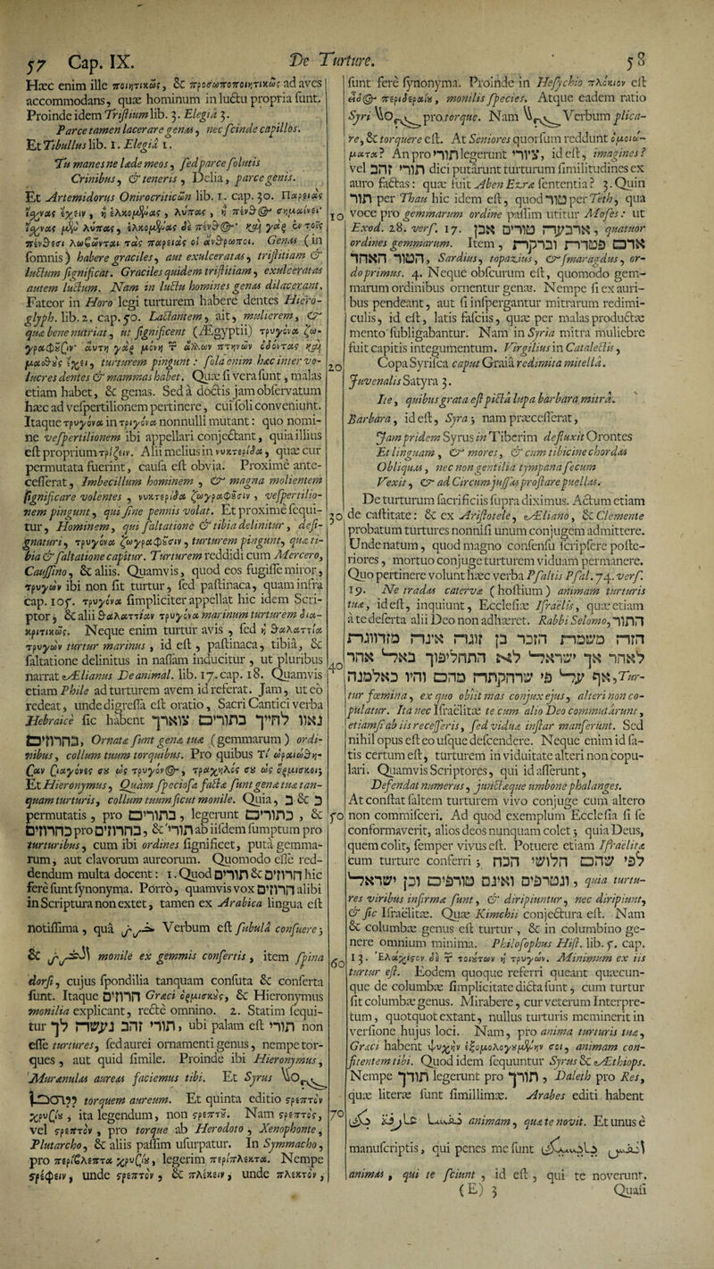 j7 Cap. IX. Turture Haec enim ille TroiyjTnidg, St TspocixitoTtwnv.ug ad aves accommodans, quae hominum inludtu propria funt. Proinde idem Triflium lib. 3. Elegia 3. Parce tamen lacerare genas, nec fcinde capillos. Et Tibullus lib. I. Elegia 1. Tu manes ne Ude meos, fedparce folatis Crinibus, &amp; teneris, Delia, parce genis. Et Artemidorus Onirocriticun lib. 1. cap. 30* Elocytiag , i} IAko^wV#? , Konoig , &gt;3 cyucclvu’ [Ef AvTTtfi?, iAnofdfotg eft/rivEt®-* yag tvroig Ttiv&amp;zci AooQwvrou t«? 7tapuotg oi otv&amp;poiTtoi. Genas (in (omnis ) habere graciles, aut exulceratas, trijhtiam GT labium fi anifc at. Graciles quidem trijhtiam, exulceratas autem labiam. Nam in lubtu homines genas dilacerant. Fateor in Horo legi turturem habere dentes Hiero- glyph. lib. 2. cap.50. Lablantem, ait, mulierem, eri* qua bene nutriat, ut flgnificent (iEgyptii) Tpuycv# £&amp;&gt;• jwov»? t? a?Awv 7rr*ivM cSotTag f(ct] fAdS-xs iftci, turturem pingunt: fola enim hac inter vo¬ lucres dentes &amp; mammas habet. Quae (i vera funt 9 malas etiam habet, &amp; genas. Sed a doctis jamobfervatum haec ad vefpertilionem pertinere, cui foli conveniunt. Itaque tpujriv» in rpiyovot nonnulli mutant: quo nomi¬ ne vefpertilionem ibi appellari conjedtant, quia illius eft proprium Tpigeiv. Alii melius in w^rsplSa, quae cur permutata fuerint, caufa eft obvia. Proxime ante- ceflerat, Imbecillum hominem , &amp; magna molientem fignifeare volentes , vujcTepIS« ZfiypoiQSciv , vefpertilio¬ nem pingant, qui fine pennis volat. Et proxime (equi¬ tur, Hominem, qui faltatione &amp; tibia delinitur, defi- gnaturi, •xpvyovoo ipwypctQZciv, turturem pingunt, qua ti¬ bia &amp;faltatione capitur. Turturem reddidi cum Mercero, Caujfino, &amp; aliis. Quamvis, quod eos fugifiemiror, *p vyuv ibi non (it turtur, fed paftinaca, quam infra cap. 107. rpvyovot (impliciter appellat hic idem Scri¬ ptor 5 Sc alii S-cthomiav rpvyovot marinum turturem Snx,- xpniHeos. Neque enim turtur avis , fed n ^aAarrix ‘rpvydv turtur marinus , id eft , paftinaca, tibia, &amp; faltatione delinitus in naffam inducitur , ut pluribus narrat zsElianus Te animal, lib. 17. cap. 18. Quamvis etiam Phile ad turturem avem id referat. Jam, ut eo redeat, unde digrefta eft oratio, Sacri Cantici verba Hebraice ftc hient DniTD fcpn'? WX1 CWVI^j Ornata funt gena tua, (gemmarum) ordi¬ nibus , collum tuum torquibus. Pro quibus T/ dpoadS-y Qav QotyoviS as ds rpvyov@-, rpayyheg as dg o^faicaor, Et Hieronymus, Quam fpeciofa fabhe funt gena tua tan- quam turturis, collum tuumfic ut monile. Quia, 3 &amp; D permutatis, pro CDHirO 5 legerunt CDHiniD , &amp; BWrtDproOWrO* &amp; 'Hin ^b iifdem fumptum pro turturibus, cum ibi ordines fignificet, puta gemma¬ rum , aut clavorum aureorum. Quomodo efte red¬ dendum multa docent: 1. Quod OHID &amp; hic fere funt fynonyma. Porro, quamvis vox D’?nn alibi in Scriptura non extet, tamen ex Arabica lingua eft notiftima , qua Verbum eft fubuld confuere 3 &amp;C monile ex gemmis confertis , item /pina s~ dorfl, cujus fpondilia tanquam condita Sc conferta liint. Itaque CPfVin Graci o^iansg, 6c Hieronymus monilia explicant, recte omnino. 2. Statim (equi¬ tur *]*? mi mn &gt; Ubi palam eft nin non efte turtures, fed aurei ornamenti genus, nempe tor¬ ques , aut quid (imile. Proinde ibi Hieronymus, JHuranulos aureas faciemus tibi. Et Syrus torquem aureum. Et quinta editio ypsjmft %PvQfe , ita legendum, non ?pt7nx. Nam s-pg^ToV, vel fpsjrrov , pro torque ab Herodoto, Xenophonte, Plutarcho, &amp; aliis paffim ufurpatur. In Symmacho, pro jrep/GAsjrr* jgpufYa, legerim ?repi'?rAejtT*. Nempe speQtiv f unde ffemov 3 tk 7rhwuv, unde irtemiv, 58 funt fere fynonyma. Proinde 111 Hefychio ?rAUiov eft eto@r 7rep&lt;cTgp«/», monilis fpecies. Atque eadem ratio Syri Wo^^pro torque. Nam Verbum plica¬ re, Sc torquere eft. At Seniores quorfum reddunt o/aoid- tx? An pro HTH legerunt id eft, imagines? vel 2H? Hin dici putarunt turturum (Imilitudines ex auro fictas: qute fuit Ab en Ezrra fententia ? 3. Quin rilH per Thau hic idem eft, quodperTeth, qua l q voce pro gemmarum ordine paftim utitur Alofes : ut Exod. 28. verf. 17. pft QH163 5 quatuor ordines gemmarum. Item , mQS in«n *11Dn&gt; Sardius, topazdus, Crfmaragdus, or¬ do primus. 4. Neque obfcurum eft, quomodo gem¬ marum ordinibus ornentur genas. Nempe fi ex auri¬ bus pendeant, aut fi infpergantur mitrarum redimi¬ culis , id eft, latis fafciis, quae per malas productm mento fubligabantur. Nam in Syria mitra muliebre fuit capitis integumentum. Virgilius in CatalebUs, 20 Copa Syrifca caput Graia redimita mitella. Juvenalis Satyra 3. Ite, quibus grata ef pici a lupa barbara mitra. Barbara, id eft, Syra 3 nam praeceflerat, Jam pridem Syrus in Tiberim defluxit Orontes Et linquam . Cr mores, &amp; cum tibicine chordos O 7 J Obliquos, nec non gentilia tympana fecum Texit, ad Circumjujfos proflare puellos. . De turturum facrificiis fupra diximus. Actum etiam de caftitate: St ex Ariflotele, &lt;NEliano, &amp; Clemente probatum turtures nonnifi unum conjugem admittere. Unde natum, quod magno confenfu fcripfere pofte- riores, mortuo conjuge turturem viduam permanere. Quo pertinere volunt haec verba Pfaltis Pfal. 74. verf 19. Ne tr a dos caterva (hoftium) animam turturis tuo, id eft, inquiunt, Ecclefiae Ifraelis, quae etiam atedeferta alii Deo non adhaeret. Rabbi Selomo,T\p,T\ ruirftD nm ruir p nsro nrn ^is^nnn -jn vm dhd nnpm^ ,Tur- tur foemin a, ex quo obiit mas conjuxejus, alteri non co¬ pulatur. Ita nec Ifraelitae te cum alio Teo commutarunt, etiamfiab iis recejferis, fed vidua infiar manferunt. Sed nihil opus eft eo ufque defeendere. Neque enim id fa¬ tis certum eft, turturem in viduitate alteri non copu¬ lari . Quamvis Scriptores, qui id atterunt, Defendat numerus, junbloque umbone phalanges. At conftat faltem turturem vivo conjuge cum altero yo non commifceri. Ad quod exemplum Ecclefia fi fe conformaverit, alios deos nunquam colet * quia Deus, quem colit, femper vivus eft. Potuere etiam Ifrdelita cum turture conferri 5 rOH EDTO y£h pi a*s-\ia dj*ki , quia turtu¬ res viribus infirma funt, &amp; diripiuntur, nec diripiunt, &amp; fic Ifraelitae. Quae Kimchii conjectura eft. Nam &amp; columbae genus eft turtur , &amp; in columbino ge¬ nere omnium minima. PhUofophus Hifl. lib. f. cap. I 3. EAu^igov o\ t? Toixrav yi rpvydv. Minimum ex iis turtur efl. Eodem quoque referri queant quaecun¬ que de columbae (implicitate dicta funt, cum turtur fit columbae genus. Mirabere, cur veterum Interpre¬ tum , quotquot extant, nullus turturis meminerit in verfione hujus loci. Nam, pro anima turturis tua, Grsci habent i%o[xoKoyx[$iiv coi, animam con- fltentemtibi. Quod idem (equuntur Syrus &amp; &lt;aAEthiops. Nempe “plU legerunt pro ‘■plH , Daleth pro Res, quae literae funt fimillimae. Arabes editi habent animam, quate novit. Et unus e manuferiptis, qui penes me funt 40 60 animos, qui te fciunt , id eft , qui te noverunt. (E) 3 Quafi