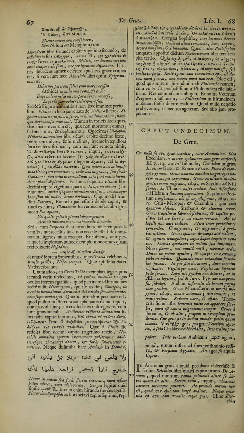 6? XffjbWfl A! «f «4>*vt©j , N«Aov, rnTi Mi^Cpiv. JtJjeme autem non confpiceris * Sive Nilum aut Memphim petas. Herodotus libri fecundi capite vigefimo fecundo, de Mitkiopia fub ^Egypto ,■ 'Ijct7m Se , rfij yjhtSons Si hi©- eovres i*. oi7to\et7ns<n. Milvi, & hirundines toto anni tempore ibi funt, necperhyemem difcedunt. Utut fit, difcedens agmen deferere apud eas grave crimen eft, fi vera funt haec Martialis libri quinti Epigram¬ mate 6%. Hibernes peterent [olito cum more recejfm Atthides m nidu una remanfit avis : Deprendere nefas ad tempora verna reverfa , Et profugam volucres diripuere fu a. Sed Sc a frigore manentibus non leve imminet pericu¬ lum. P limus in loco jam citato de Arcturo fidere, Si¬ gnum orientis ejusfideris fervemur hirundinum abitu, nam¬ que deprehenft intereunt. Tamen in apricis locis quas¬ dam manere certum efi, quae non moriuntur omnes, fednudantur, 8c deplumantur. QuocircaPhilofphus Hiftoria animalium libri odtavi capite decimo fexto, poftquam milvos, tk hirundines, hyeme in tepidiora loca conferre fe docuit, cum non funt remota nimis, 'Ot Se 7Tofj>OT(pCd QVTtg T TOltSTUV , inquit, Sil tKTOTtlfyi- £<, dft\oi xfnrxffiv eoivrxg' yjStj yotg dfafifiou dc\ 7roA- Aed yeKiSSves bv ctyydot; (lege bv olyxeau, vel bv dy- 7td^ttctv. Qua, autem aves ab hujuf- modi locis funt remotiores, inde non migrant, fedfeab- fcondunt: jam enim in convallibus vifa funt multa hirun¬ dines plane deplumes. Et hunc fequutus Plinius libri decimi capite vigefimo quarto, In vicma abeunt ( hi¬ rundines) apricos fequuta montium recejf us, inventaque jam funt ibi nuda, atque deplumes. Cujulmodi hirun¬ dini Eutropii, Eunuchi jam effceti depile caput, & tinea exefum , Claudianus his verbis confert libro pri¬ mo in Eutropium, Hei qualis gelidis pluma labentepruinis Arboris immoritur trunco brumalis hirundo. Sed , cum Propheta dicit hirundines nofie tempus ad¬ ventus, autreceflus fui, nonnecefle eft id de omni¬ bus intelligere, nulla excepta. Et fufficit, utinple- rifque id impleatur, ut hoc exemplo moneamur, quam recte dixerit Hefiodus, xoupos A! e7r)7rc4!nv «pi?©j 8c unus e feptem Sapientibus, quos Gracia celebravit, Kaifov yvuB-i, Nofce tempus. Quae ipfifiima Sacri Vatis verba funt. Unum addo, in Graco Tobia exemplari legi capitis fecundi verfu undecimo, ad ??%&/<* aviculas in ejus oculos ftercus egefiifie, quod pertinere ad hirundines recte vidit Hieronymus, qui fic reddit, Contigit, ut ex nido hirundinum dormienti illi calida flercora incide* rentfuper oculos ejus. Quia id hirundini peculiare eft, quod pullorum ftercora aut ipfa mater ex nido ejicit, cum parvuli funt j aut eos docet ex nido egerere, cum funt grandiufculi. Ariftoteles Hiftoria animalium li¬ bri noni capite feptimo , Kot) xoTpov to nfitov dvaotl USdlhiSffiv' oruv Se dv^^uei peaoi?pe<QovTcis Si- Soi(fixffi rxs veoaaxe 7rpoieo9<xi. Quae a Plinio fic reddita libri decimi capite trigefimo tertio , No¬ tabili munditia egerunt excrementa pullorum : adul- tiorefque circumagi docent, Cr foras faturitatem e- mittere. Neque diftimilia haec Arabum in Damire, • * 4» •• IO yloti 3 0 XoQtsqg , yzZtScv^y ebpdmjg W ccvtqv dnlrtx- rov, Ttpog dviY,v , 'Ou xcnZd txvtx («7T£v) J «fiAo^jlAai. Gorgias Sophifta, cum hirundo ftercus in eum emifffet, oculis ad illam converfis, hac, inquit, decora non funt, O Philomela. Quod laudat Philofophus tanquam appofite dictum Rhetoricorum libri tertii ca¬ pite tertio. Quia [fia , « £7rotqav, xx , 7toiftivw 3 «i^/pcv sv XV eAotSoptjetv , einwv c 0 egiv, avi quidem, fi fecerat, id turpe non eft , fed puella turpe eft. Re cie igitur eam convitiatus eft, id di¬ cens quod fuerat, non autem quod tum er at. Nec eft , quod quis miretur hirundini indi PhilomeU nomen, cum vulgo fit perfuafifiimum Philomelam efte lufci- niarn. Res enim eft in ambiguo. Et multi Veterum Prognen in lufciniam, ac Philomelam in hirundinem mutatam fuifle diferte tradunt. Quod nullo negotio probaverim, fi haec res ageretur. Sed alio jam pro¬ peramus. zo CAPUT UNDECIMUM. De Grue. 40 Cur nulla fit avis grue vocalior, ratio Anatomica. Ideo Ezechiam in morbo ejulantem cum grue conferri, Ef. 38.14. Sic in Talmude, Clamabat ut grus. Ita etiam Graeci cr Romani Poeta. Plura de clan¬ gore gruum. Gruis nomina omnibus linguis ejus vo¬ cem utcunque exprimunt. Grues ex ultimis m ulti¬ ma terrarum migrant,' id eft, ex Scythia ad Nili fontes. In Thracia nafci credita. Inde difcefurce. ad Hebrum fluvium conveniunt. Scythicae Pon¬ tum tranfvolant, ubi eft anguftijfimus, id eft, in¬ ter Criu - Metopon Cr Carambin : qua loca quantum diftent. Strabonis Cr aliorum error. Grues trajebluras faburrd ftabiliri, & lapillos pe¬ dibus vel ore ferre , vel etiam vorare. An hi lapilli fint auri indices. Mira inter profeliuras concordia. Congruere , Cr ingruere , a grui¬ bus ditium. Grues quatuor de caufts alte volant , O0 agmine triangulari, cujus bafim impellat ven¬ tus. Liter as quafdam in volatu fuo imitantur. Noto flante , vel aquila vifd , turbatur ordo, Duces in primo agmine , & xpxyo) in extremo, plebs in medio. Quomodo inter volandum fe mu¬ tuo juvent. In quo fitu dormiant, duce interirn vigilante. Vigilia per vices. Vigiles cur lapidem pede ferant. Lapis ille gruibus non Silnvov, ut in AEJiano legitur, fed Si vmov. Pygmaeinonpror- fus fabulofi. Arabum hiftoriola de horum pugna cum gruibus. G rues Maemadterione menfe mi¬ grant : id eft, medio autumno 5 non ineunte , ut multi volunt. Redeunt vere, & aftate. Theo¬ criti Scholiaftes [ementis initio eas apparere fcri- bit, quod eft contra migrationis tempus. Grues d Jeremia, & ab aliis , proponi in exemplum pru¬ dentia. Cur grus fit in avibm mundis potius quam ciconia. Vox agor, pro grue Veteribus igno¬ ta, d folo Chaldaeo re51 e reddita , licet ordine pro.- poftero. Inde verbum Arabicum agara, id eft , gruum inftar ad fuos poftliminio redi¬ re, & Per ficum dyyotfoi. An agor fit aquila Cypriis. Lcque in nidum fed foras ftercus excernit, quod ipfum pu os edocet, cum adoleverunt. Gorgia legitur quid imule accidillc. In eum enim hirundo ftercus egefiit. 1 lutarchus Sympoftacom libri octavi capite feptimo, Tcg- 70 In Anatomia gruis aliquid peculiare obfervafte fe feribit Bellonius libri quarti capite primo De A- vibus, quod nimirum canna pulmonis aliter fe ha¬ bet quam in aliis. Sterno enim , inquit, adharens carnem utrimque penetrat. Ac proinde mirum non eft, quod vox ejus tam longe auditur. Neque enim J ulla eft avis tam Vocalis atque grus. Hinc Ez,e- chix*