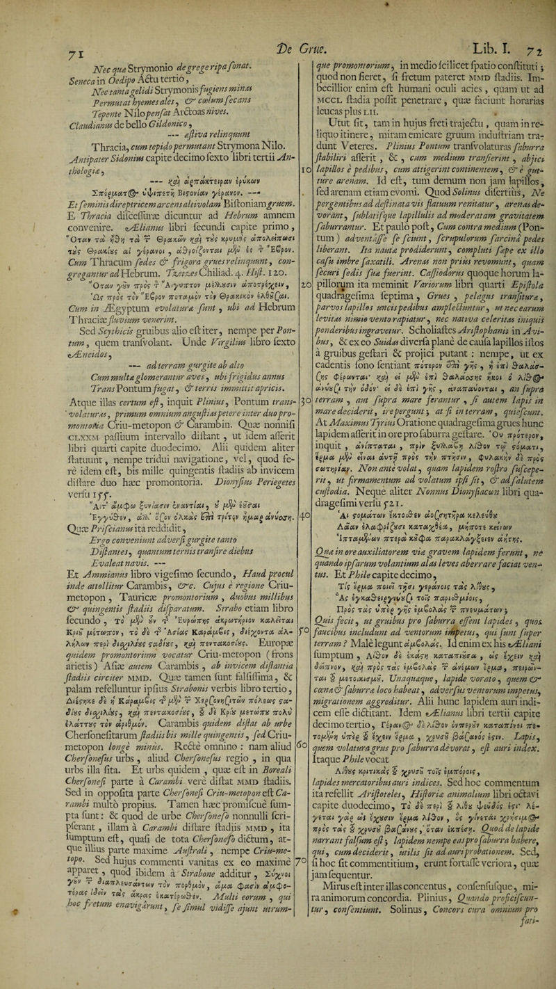 Nec qua Strymonio de grege ripafonat. Seneca in Oedipo A£lu tertio, Nec tanta gelidi Strymonis fugiens minxi Permutat hyemes ales , &amp; coelum fecans Tepente Nilopenfat Arctoas nives. Claudianus de bello Gildonico, — afliva relinquunt Thracia, cum tepido permutant Strymona Nilo. Antipater Sidonius capite decimo fexto libri tertii An- tho logia, — rjjf dp7rdureipctv zpvxwv 'S.n'i(&gt;fxon(§r tyi Bigaviav y&amp;fotvov. —* Et feminis direptricem arcens altivolam Billoniam^mw. E Thracia difcefliirae dicuntur ad Hebrum amnem convenire. zAElianm libri fecundi capite primo, ’ Ot#V TU&gt; *IByj T05 T ©pOLKWV &gt;(dj ttig JtpUjWS? aTtOACiltUei ©poiKtXs ai yzpocvoi , oi&amp;poiQvTc/A yfi i; r E£pov. Cum Thracum /edes &amp; frigora grues relinquunt, con¬ gregantur ad Hebrum. Taetres Chiliad. 4. Hift. 120. Otav yxv Ttpog t 71 AiyvitTOV uzHAaeiv diraTfn^nv, '£lg 7Tp oi TCV T£pOV 7tOTdy.lv T OV QpOtXPtQ V bASsiQdl. Cum in jEgyptum evolatura, funt , ubi ad Hebrum Thracivc fluvium venerint. Sed Scythicis gruibus alio e 11 iter, nempe per Pon¬ tum , quem tranfvolant. Unde Virgihm libro fexto aASneidos, ' — ad terram gurgite ab alto Cum multa glomerantur aves, ubi fi'rigidus annus Trans Pontum fugat, &amp; terris immittit apricis. Atque illas certum eft, inquit Plinius, Pontum trans- ' volaturas, primum omnium anguftiaspetere inter duopro¬ montoria Criu-metopon &amp; Carambin. Quae nonnifi clxxm pailuum intervallo diftant, ut idem afierit libri quarti capite duodecimo. Alii quidem aliter llatuunt, nempe tridui navigatione, vel, quod fe¬ re idem efl, bis mille quingentis fladiis ab invicem diflare duo haec promontoria. Dionyfws Periegetes verfu iyy. ''ait dfxtyco (^vvioteiv csdvrldt, x y%3 iScou 'EyyiiBzv, dod oQov cAxds 'Qrt rpA^v yjpag dvv&amp;s&gt;j. Qute Prifcianus ita reddidit, jErgo conveniunt adverfigurgite tanto Diftantes, quantum ternis tranfire diebus Evaleat navis. — Et Ammianus libro vige fimo fecundo, Haud procul inde attollitur Carambis, &amp;c. Cujus e regione Criu- metopon , Tauricae promontorium , duobus millibus (A quingentis fladiis difparatum. Strabo etiam libro fecundo , To' Qft iv 'Eopobtvjg ccKfusTijfiov xaAetTou Kpix y,iuo7tov, to 3\ rp ‘Asinii KapdyStg, 3iz%ovto, «A- Ay&gt;Awv 7rep) oi^iAtxs saStxs, tQ) 7revT«Jco&lt;r/*?k Europae quidem promontorium vocatur Criu-metopon (frons arietis) Afiae autem Carambis , ab invicem diflantia fladiis circiter mmd. Quae tamen funt falfiflima, &amp; palam refelluntur ipfius Strabonis verbis libro tertio, Aigs^g n KctpayGig ^ ydft r XegfvyQtoov 710Aucg 50,- Slxg SiyyAixg, rfljj 7rzvTciKo&lt;ri%i, J 3z Kpia yzrcoTTX rroAv Iauttus tcv dpiQy.cv. Carambis quidem diflat ab urbe Cherfbnefitarum fladiis bis mille quingentis , fed Criu- metopon longe minus. Recte omnino : nam aliud Cherfonefus urbs , aliud Cherfonefus regio , in qua urbs illa lita. Et urbs quidem , quae eft in Boreali Cherfonefl parte a Carambi vere diflat mmd ltadiis. Sed in oppofita parte Cherfonefl Criu-metopon eft Ca¬ rambi multo propius. Tamen haec promifeue fum- pta funt: dc quod de urbe Cherfonefo nonnulli feri- pferant , illam a Carambi diflare ltadiis mmd , ita lumptumefl, quali de tota Cherfonefo didtum, at¬ que illius parte maxime Aufirali, nempe Criu-me- t°p°- Sed hujus commenti vanitas ex eo maxime aPPa^ct 5 quod ibidem a Strabone additur , Xvyvot fi ^f&amp;nAivroivTwv tov TropSjWov, dyx Qa&lt;r'iv oty,Qo- rzpcxi 1 hv t a? dyas iKotTzpwBiv. Multi eorum , qui joc fi e tum enavigarunt, fe Jimul vidijfe ajunt utrum- 10 20 30 40 yo 60 7° que promontorium, in medio fcilicet fpatio conftituti j quod non fieret, fi fretum pateret mmd fladiis. Im¬ becillior enim eft humani oculi acies, quam ut ad mccl fladia poflit penetrare, quae faciunt horarias leucas plus lii. Utut fit, tam in hujus freti trajectu , quam in re¬ liquo itinere, miram emicare gruum indullriam tra¬ dunt Veteres. P limus Pontum tranfvolaturas faburra flabiliri afierit , &amp; , cum medium tranflerint , abjici lapillos e pedibus, cum attigerint continentem, &amp; e gut¬ ture arenam. Id eft, tum demum non jam lapillos, fed arenam etiam evomi. Quod Solmus difertiiis, Ne pergentibus ad deflinata vis flatuum renitatur , arenas de¬ vorant , fublatifque lapillulis ad moderatam gravitatem faburrantur. Et paulo poli, Cum contra medium (Pon¬ tum ) adventajfe fe fciunt, fcrupulorum farcind pedes liberant. Ita nauta, prodiderunt, compluti fepe ex illo cafu imbre faxatili. Arenas non prius revomunt, quam fecuri fedis fita fuerint. Caffiodorus quoque horum la¬ pillorum ita meminit Variorum libri quarti Epiflola quadragefima feptima , Grues , pelagus tranflturx, parvos lapillos uncis pedibus amplecluntur, ut nec earum levitas nimio vento rapiatur , nec nativa celeritas iniquis ponderibus ingravetur. Scholialtcs Ariflophams in Avi¬ bus , &amp; ex eo Suidas diverfa plane de caufa lapillos illos a gruibus geltari &amp;C projici putant : nempe f ut ex cadentis folio fentiant 7roT£pov 53n yw 9 $ in) 9otAde- Qii Qzpuvrou' rjfi et ySfi kn\ 9«A«ojjjf ijKOi 0 A1BQ* dvva(ji tJv bidr ei Jg hu yijg , c&amp;vxzoivqvtou , an fupra terram , aut fupra mare ferantur , fi autem lapis in mare deciderit, ire pergunt', at fi rn terram, quiefeunt. At Maximus Tyrius Oratione quadragefima grues hunc lapidem afierit in ore pro faburra geftare. 'Gu jrpmpov, inquit , dvlnTonou , 7rfiv AtBov tJ , enica dvsy 740? tJv mijetv , QvAaxfi dg tsoqs ffunyjptxy. Non ante volat, quam lapidem roflr.o fufeepe- rit, ut firmamentum ad volatum igfi Jit, &amp; ad falutem cuflodia. Neque aliter Nonnus Dionyfiacum libri qua- dragefimi verfu y 21. A» soydnov zktqcSzv do(je^Tryot xzAevOx Aocav iAottppifoft xoiTct^eoi, [xvnrort xeivuv 'ItTctySfim ttTzpoc xiifxx, TtapaxAdy^iev d^rr,?. Qjia in ore auxiliatorem via gravem lapidem ferunt, ne quando ipfarum volantium alas leves aberrare faciat ven¬ tus. Et Phile capite decimo, T/f ztyxoi 7toiei Tpffi yzfolvoii rds Ai^?, '■'A? iyxoiBi^yvxf^ffi toig 7tcipi(&amp;y,iots, \ x c\Sm&gt; &lt;3 \ as, / upog rag v7ti(&gt; yy\g ty&amp;oAcig t Ttvzoy.st.Tm5 Quis fecit, ut gruibus pro faburra effent lapides , quos faucibus includunt ad ventorum impetus, qui funt fuper terram i Male legunt dyQoAdg. Id enim ex his MEliani fumptum , AIBov 31 zxdsvi xonenuxeee , 00g ztv rfij deiTtvov, 7tfog Tug zy^CACig t csvzyuv z^ya, Ttzi^wv- tou £ uzTOiKiffyis. Unaquaque, lapide vorato, quemeA coena &amp; faburra loco habeat, adverfus ventorum impetus, migrationem aggreditur. Alii hunc lapidem auri indi¬ cem effie dictitant. Idem &lt;u£lianus libri tertii capite decimo tertio, r gp &lt;x,v(gg 3\ aIBov ovtrzpxv narent tvu iti* Toyifiy] vTti£ § zgya , fflveS fidfavog zgtv. Lapis, quem volatura grus pro faburra devorat, efl auri index. Itaque Phile vocat AlOxg KjiiTtxcig § roig lyntopoig, lapides mercatoribus auri indices. Sed hoc commentum ita refellit Arifloteles, Hifloria animalium libri octavi capite duodecimo, To' 3\ itzp&lt; J A$a vfgodoV isr Ai- yiTcci ydo cos igseiv egyoi AiSqv , cg ylvzTXi 7tpcg rdg £ ^puers? fiaQotvisgotccv iKTrzey. Qjsoddelapide narrant falfum efl j lapidem nempe eas pro faburra habere, qui, cum deciderit, utilis fit ad auriprobationem. Sed, fi hoc fit commentitium, erunt fortafie veriora, qux jamfequentur. Mirus efl inter illas concentus, confenfufque, mi¬ ra animorum concordia. Plinius, Qjiando proficifcun- tur, confentiunt. Solinus, Concors cura omnium pro fati-