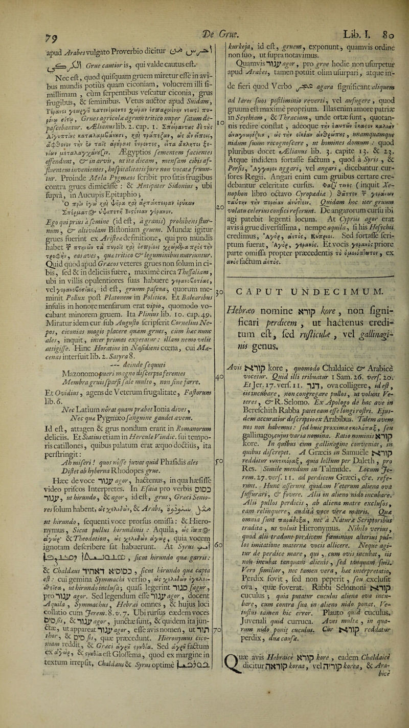 De 79 apud Arabes vulgato Proverbio dicitur cVv ^ Grue cautior is, qui valde cautus eft. Nec eft, quod quifquam gruem miretur efte in avi¬ bus mundis potius quam ciconiam, volucrem illi fi- millimam , cum ferpentibus Vefcatur ciconia, grus frudibus, &amp; feminibus. Vetus auctor apud Smdam, Ttpavci yia^yx tcarev(/xovto %cop«V io-zrag/uivtiv 7ro- fjvu e!fu , Grues agricola agrum tritico nuper fatum de- pafcebantur. tASlianusiib. 2. cap. I. 27rflp«vT«? cIstsI? A.lyV7CT 1*9 KCtTCthotpGocMSiri , Tp«7Tg£«V, CCS UV&amp;7T01S) a&amp;Sovov Tvjv bv rotis «papa/? svpovrs?, «t« «xAjjtq/ fs- v,W fxiTotXuy^dvxQv. AEgyptios [ementem facientes offendunt, in arvis, ut it a dicam, menfam cibis af¬ fluentem invenientes, bofpitaUtatisjure tion vocat a frumi¬ tur. Proinde Pygmaos fcribit pro fatis frugibus contra grues dimicafle : &amp; Antipater Sidonius , ubi ftipra, in Aucupis Epitaphio $ C0 TTplv /(Af £$4 «^«^Tg/paV ip vtJjTrgTij B/foWv j/gpavov. Ego qui prius d femine (id eft, d granis) prohibens fur¬ num , £7- altivolam Biftoniam gruem. Mundae igitur grues fuerint ex Arifleadefinitione, qui pro mundis habet r fryjvcav t« Tn/pot? ^ btr&amp;flots tt[s t/v Grue. Lib. I. 8 o IO 3° 40 T^oc$&gt;fjv, 6W /zw; 5 qua tritico &lt;Cr leguminibus nutriuntur. Quid quod apud Gracos veteres grues non folum in ci¬ bis, fed Sc in deliciis fuere, maxime circa The/faliam, ubi in villis opulentiores fuas habuere ^?p«vo€or/«?, velyep«vc€c!&lt;n«?, id eft, gruumpafcuaquorum me¬ minit Pollux poft Platonem in Politico. Et Balearibus infulis in honore menfarum erat vipio, quomodo vo¬ cabant minorem gruem. Ita Plinius lib. 10. cap. 49. Miratur idem cur fub Augufio fcnpferit Cornelius Ne¬ pos, ciconias magis placere quam grues, cum hac nunc ales, inquit, interprimas expetatur : illam nemo velit attigi/fe. Hinc Horatius in Nafdiem cocna, cui Ma¬ cen as interfuit lib. 2. Satyra 8. --- deinde fequuti Mazonomorum magno difeerptaferentes Membra gruisfparfi fale multo , non [ne far re. Et Ovidius, agens de Vetenim frugalitate, Faforum lib. &lt;5. Nec Latium nbrat quam prabet Ionia dives, Nec qua Pygmaeo [anguine gaudet avem. Id eft, attagen Sc grus nondum erant in Romanorum deliciis. Et Statius etiam in Hercule Vindic, fui tempo¬ ris catillones, quibus palatum erat aequo do&lt;5tiiis, ita perftringit : Ah miferi! quos noffe juvat quid Phafidis ales Difiet ab hyberna Rhodopes grue. Haec de voce 1UP agor, hactenus, in qua hsefifTe video prifeos Interpretes. In Efaia pro verbis DIDI) ut hirundo, &amp; agor, id eft, grus, Gr aci Senio¬ res folum habent, &amp;&gt;? yyKiSdv, Sc Arabs, 'bj.ij.Nu J ut hirundo, fequenti voce prorfus omifta: &amp; Hiero¬ nymus, Sicut pullus hirundinis : Aquila, m Hrcyg dydg ScTheodotion, ug %thiSwv dyu^, quia vocem ignotam deferibere fit habuerunt. At Syrus Lv JLl-09 | A_a_1QJ_.CC , ficut hirundo qua garrit: &amp;C Chaldaus K*D1DD 5 fiCHt hirundo qua capta efl: cui gemina Symmachi verfio, «? %sA/«J«i/ iyntei- (&amp;e~&lt;rot, ut hirundo inclufa •, quafi legerint ffgur, pro IBfp agor. Sed legendum efTe agor , docent Aquila , Symmachus, Hebrai omnes , Sc hujus loci collatio cum fierem. 8.^. 7. Ubirurfus eaedem voces agor, junctaefunt, Se quidem ita jun- ut appareat “11^ agor, efTe avis nomen, ut 1171 |7° thor, Sc yb, qUas pj-£ecedunt. Hieronymus cico- niamyeddit, Sc Graci oiy^x ypssS/«. Sed oiyp fa£tum cx « yug, Sc s-psG/a eft GlofTema, quod ex margine in textum iirepftt, chaldaus Sc Syrus optime |»a.d5QH kurkeja, id eft, gruem, exponunt, quamvis ordine non fuo, ut fupra notavimus. Quamvis agor, pro grue hodie non ufurpetiir apud Arabes, tamen potuit olim ufurpari, atque in¬ de fieri quod Verbo [P'* agar a fignificant aliquem ad lares fuos pofliminio reverti, vel aufugere , quod gruum eft maxime proprium. Illas enim amore patriae in Scythiam, Sc Thraciam, unde ortae funt, quotan¬ nis redire conflat, adeoque fv Ixvtuv gxas-ov x«aidv dvayvwpffav , u; vljv ctntotv «vft^wTTB? , unamquamque nidum fuum recognofcere , ut homines domum : quod pluribus docet i/£lianus lib. 3. capite 13. &amp; 25. Atque indidem fortafle factum , quod a Syris , Sc Perfsj v Ayyayoi aggari, vel an gari, dicebantur cur- fores Regii, Angari enim cum gruibus certare cre¬ debantur celeritate curfus. $xQ' r/ve? ( inquit Xe¬ nophon libro octavo Cyropadia ) A«ttov r yepdvav tmutyjv TYtV Ttofdxv oivvTiziv. Quidam hoc iter gruum volatu celerius confici referunt. De angarorum curlli ibi agi patebit legenti locum. At Cypriis agor erat avis a grue diverfiflima, nempe aquila, fi his Hefychii credimus, ’ayo$9 duos, Kw^i. Sed fortafle feri- ptum fuerat, ’Ayo$, ytpavos. Et vocis ytfxvos priore parte omifta propter praecedentis ro bpoibaloinov, ex «vA fadtUm «sto'?. f° 60 CAPUT UNDECIMUM. Hebrxo nomine kore , non figni- ficari perdicem y uc hadenus credi¬ tum eft 3 led ruJlicuUe , vel gallinagi- nid genus. Avis Ntllp kore , quomodo Chaldaice Cr Arabice vocetur. Quid illi tribuatur 1 Sam. 26. verf. 20. Et Jer. 17. verf. 11. in &gt; ova colligere, id e fi, iis incubare, non congregare pullos, ut volunt Ve¬ teres , C^R.Selomo. Ex Apologo de hac ave in Berefchith Rabba patet eam effe longi rojlri. Ejus¬ dem accuratior deferiptioex Arabibus. Talem avem nos non habemus: fedhuicproximackoAoV«|, /ere gallinagojcujus varia nomina. Ratio nominis kore. In quibus cum gallinagme conveniat, in quibus diferepet. A Graecis in Samuele redditur vuxT/jtop«|, quia leblum per Daleth , pro Res. Simile mendum in Talmude. Locum /fie¬ rem. 27. verf. 11. ad perdicem Graeci, &amp;c. refe¬ runt. Hunc afferunt quidam Veterum aliena ova f uffurari, &amp; fovere. Alii in alieno nido incubare. Alii pullos perdicis , ab aliena matre exclufos, eam relinquere, audita voce vera matris. Qua omnia funt 7r«?ach£«, nec d Natura Scriptoribus tradita , ut voluit Hieronymus. Nihilo verius, quod alii tradunt perdicem foeminam alterius pul¬ los imitatione materna vocis allicere. Neque agi¬ tur de perdice mare, qui , cum ovis incubat, iis noti incubat tanquam alienis , fed tanquam fuiE Vero fimihor ^ nec tamen vera, hac interpretatio^ Perdix fovit , fed non peperit, feu exclufit ova , quae foverat. Rabbi Selomoni JsOlp cuculus } quia putatur cuculus aliena ova incu¬ bare, cum contra fua in alieno nido ponat. Ve- tuftus tamen hic error. Plauto quid cuculus. Juvenali quid curruca. Aves multa , in qua¬ rum nido ponit cuculus. Cur £S)}p reddatur perdix, dua caufa. Q. une avis Hebraice RTIp kore , eadem Chaldaice dicitur HiOlp koraa, vel HHlp borea, &amp; Ara¬ bice