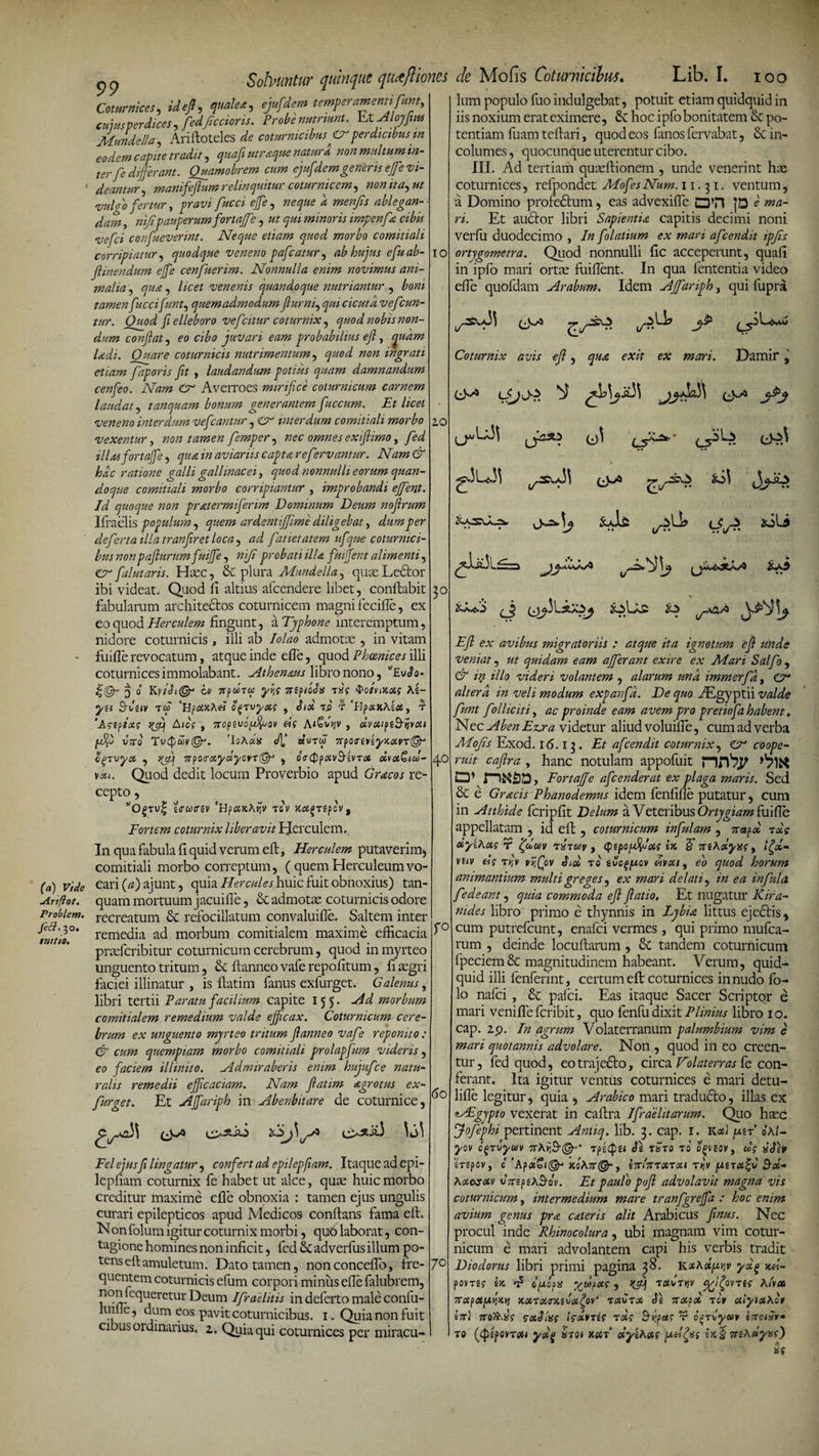 (a) Vide uirifiot. Problem. fetf. 30. initio. 99 Solvuntur quinque qaxftiones de Mofis Coturnicibus. Lib. I. 100 Coturnices, ideft, quale*, ejufdem temperamenti fum, cujus perdices ^ fedjiccioris. Probe nutriunt. hxAloyfius Mundella, Arifloteles de coturnicibus ffirperdicibus m eodem capite tradit, quafi utraque natura, non multum in¬ ter f e differant. Quamobrem cum ejufdemgeneris ejfe vi¬ deantur , manifeflum relinquitur coturnicem, nonita^ut uuldo fertur, pravi fucci ejfe , neque a menfs ablegan¬ dam , nifpauperum fortajfe, ut qui minoris impenfa cibis vefei confueverint. Neque etiam quod morbo comitiali corripiatur, quodque veneno pafcatur, ab hujus efuab- f mendum ejfe cenfuerim. Nonnulla enim novimus ani¬ malia, qua, /zcft venenis quandoque nutriantur , £o«z tamen fuccifuntj quemadmodum furni, ^zzz cicuta vefcun- tur. Quod fi elleboro vef :itur coturnix, quod nobis non¬ dum conflat, fo juvari eam probabilius efl, ^zz^ttz /&lt;ea?z. Quare coturnicis nutrimentum, »00 ingrati etiam faporis fit , laudandum potius quam damnandum cenfeo. Nam (T Averroes mirifice coturnicum carnem laudat, taliquam bonum generantem fuccum. Et licet veneno interdum ve fleantur, &amp; interdum comitiali morbo vexentur, non tamen femper, nec omnes exiflimo, fed illas fortajfe, z&gt;z aviariis capta re fervantur. Nam &amp; hac ratione galli gallinacei, quod nonnulli eorum quan¬ doque comitiali morbo corripiantur , improbandi ejfent. Id quoque non pratermiferim Dominum Deum noflrum Ifraelis populum, quem ardeniiffiime diligebat, dum per deferta illa tranfiret loca , ad fatietatem ufque coturnici¬ bus nonpaflurumfuijfe, nifi probati illa fuijfent alimenti, er falutaris. Haec, &amp; plura Mundella , quae Lector ibi videat. Quod fi altius afcendere libet, conflabit fabularum architedlos coturnicem magni fecifle, ex eo quod Herculem fingunt, a Typhone interemptum, nidore coturnicis, illi ab Iolao admotae , in vitam fuifle revocatum, atque inde efle, quod Phoenices illi coturnices immolabant. Athenaus libro nono, 5/EuJV ^30 Ky/cfi©0 ov 7rpwTw yqg ni? ioda rsg $otvixotg Ae- yei 9deiv tw 'HpctxAei ojTvyotg , dux ad v 'HpaicAecty t ‘Agtflxg A10V , ncpevoffifov dg Az£kV , &lt;jivctipe$-iivctt vno Tv&lt;$avQJ. ’loA«* J\J «utw nposeveyKoivT(§p oqtvya , rfj npocrxydycvT^ , oeQpocvSevTot dovaQiw- vcu. Quod dedit locum Proverbio apud Gracos re¬ cepto , 5/O^Tu| iffCOffiV 'BfOiXA^V TCV }C£«£TepCV, Fortem coturnix liberavit Herculem. In qua fabula fi quid verum efl, Herculem putaverim, comitiali morbo correptum, ( quem Herculeum vo¬ cari {a) ajunt, quia Hercules huic fuit obnoxius) tan- quam mortuum jacuifle, St admotae coturnicis odore recreatum St refocillatum convaluifle. Saltem inter remedia ad morbum comitialem maxime efficacia praeferibitur coturnicum cerebrum, quod in myrteo unguento tritum, St ftanneo vafe repofitum, fi aegri faciei illinatur , is flatirn fanus exfurget. Galenus, libri tertii Paratu facilium capite 155. Ad morbum comitialem remedium valde efficax. Coturnicum cere¬ brum ex unguento myrteo tritum flanneo vafe reponito : &amp; cum quempiam morbo comitiali prolapfum videris, eo faciem illinito. Admiraberis enim hujufce natu¬ ralis remedii efficaciam. Nam flatirn Agro tus ex¬ furget. Et AJfariph in Abenbitare de coturnice, Fel ejusfi lingatur , confert ad epilepflam. Itaque ad epi- lepfiam coturnix fe habet ut alce, quae huic morbo creditur maxime efle obnoxia : tamen ejus ungulis curari epilepticos apud Medicos conflans fama efl. N on folum igitur coturnix morbi, quo laborat, con¬ tagione homines non inficit, fed St adverfus illum po¬ tens efl amuletum. Dato tamen, nonconcefib, fre¬ quentem coturnicis efum corpori minus efle falubrem, nonfequeretur Deum Ifrdelitis in deferto male confu- luifie, dum eos pavit coturnicibus. 1. Quia non fuit cibus ordinarius, 2. Quia qui coturnices per miracu¬ lo zo 3° 40 lum populo fuo indulgebat, potuit etiam quidquid in iis noxium erat eximere, St hoc ipfo bonitatem St po¬ tentiam fuam teflari, quod eos fanos fervabat, St in¬ columes , quocunque uterentur cibo. III. Ad tertiam quaffiionem , unde venerint has coturnices, refpondet MofesNum. 11.31. ventum, u Domino profeStum, eas advexiffe Q»n |D e ma¬ ri. Et audior libri Sapientia capitis decimi noni verfii duodecimo , In folatium ex mari afeendit ipfs ortygometra. Quod nonnulli fic acceperunt, quafi in ipfo mari ortae fuiflent. In qua lententia video efle quofdam Arabum. Idem AJfariph, qui fupra Coturnix avis efl, qua exit ex mari. Damir, AjDP. y jjAaj\ (^a j-£j ^-3 Lxs3^ i}A&gt; ♦ • « AS» 16U A\j te» n * 60 70 teffiS ixpj te Efl ex avibus migratoriis : atque ita ignotum efl unde veniat, ut quidam eam afferant exire ex Mari Salfo , &amp; it} illo videri volantem , alarum una immerfd, altera in veli modum expanfa. De quo -/Egyptii valde funt f illiciti, ac proinde eam avem pro pretiofa habent „ NecAbenE^ravi&amp;exxvc: aliud voluifle, cum ad verba Mofs Exod. 16.13 . Et afeendit coturnix, coope¬ ruit caflra , hanc notulam appofuit Fortajfe afeenderat ex plaga maris. Sed Sc e Gracis Ph ano demus idem fenfifle putatur, cum in Atthide fcripfit Delum a Veteribus Ortygiam fuifle appellatam , id efl, coturnicum infulam , itapd tde uyihetg r ijduv txiuv , Oupo/ffag ia § mAolyng, lijcL- vuv eig ty,v vrfov Aid to tvoffxov etvoti, eo quod horum animantium multi greges, ex mari delati, in ea infula, fedeant, quia commoda efl flatio. Et nugatur Kifa- nides libro primo e thynnis in Lybia littus ejectis, cum putrefeunt, enafei vermes , qui primo mufea- rum , deinde locuflarum , &amp; tandem coturnicum fpeciem&amp; magnitudinem habeant. Verum, quid¬ quid illi fenferint, certum efl coturnices in nudo fo- lo nafei , &amp; pafei. Eas itaque Sacer Scriptor e mari venifleferibit, quo lenfudixit Plinius libro 10. cap. 29. In agrum Volaterranum palumbium vim e mari quotannis advolare. Non , quod in eo creen¬ tur, fed quod, eo trajecto, circa Dolaterras fe con¬ ferant. Ita igitur ventus coturnices e mari detu- lifle legitur, quia , Arabico mari tradudlo, illas ex AEgypto vexerat in caflra Ifraelitarum. Quo haec fofephi pertinent Antiq. lib. 3. cap. 1. Kdi pir oAf- yov cgrvyuv 7tAv;3-(^' tde tSto to offieovy ug dd\\f £T?pOV, C ,Ap&lt;Xol@J K0\7t@~ , i7tlZTXT0U TqV ^05- Aotojoiv vTtipehGov. Et paulo pofl advolavit magna vis coturnicum, intermedium mare tranfgreffa : hoc enim avium genus pra c Ater is alit Arabicus flnus. Nec procul inde Rhinocolura, ubi magnam vim cotur¬ nicum e mari advolantem capi his verbis tradit Diodorus libri primi pagina 38. KxAccprv yxg xd- povTS? ix dpopa yflpxg , Kl) tx\jty]v %l(jovre? Aivx rtoipoiy.YiKYi xxtuaxivatyr to,Ctx de iuxpx tcp ulyixAo» en) nofisig soidiag IgoivTeg nxg Sypag r oeriywv enaisu- to ydjj isTOi KoiT oiyiAotg pehjsg ex £ neAdyx?)