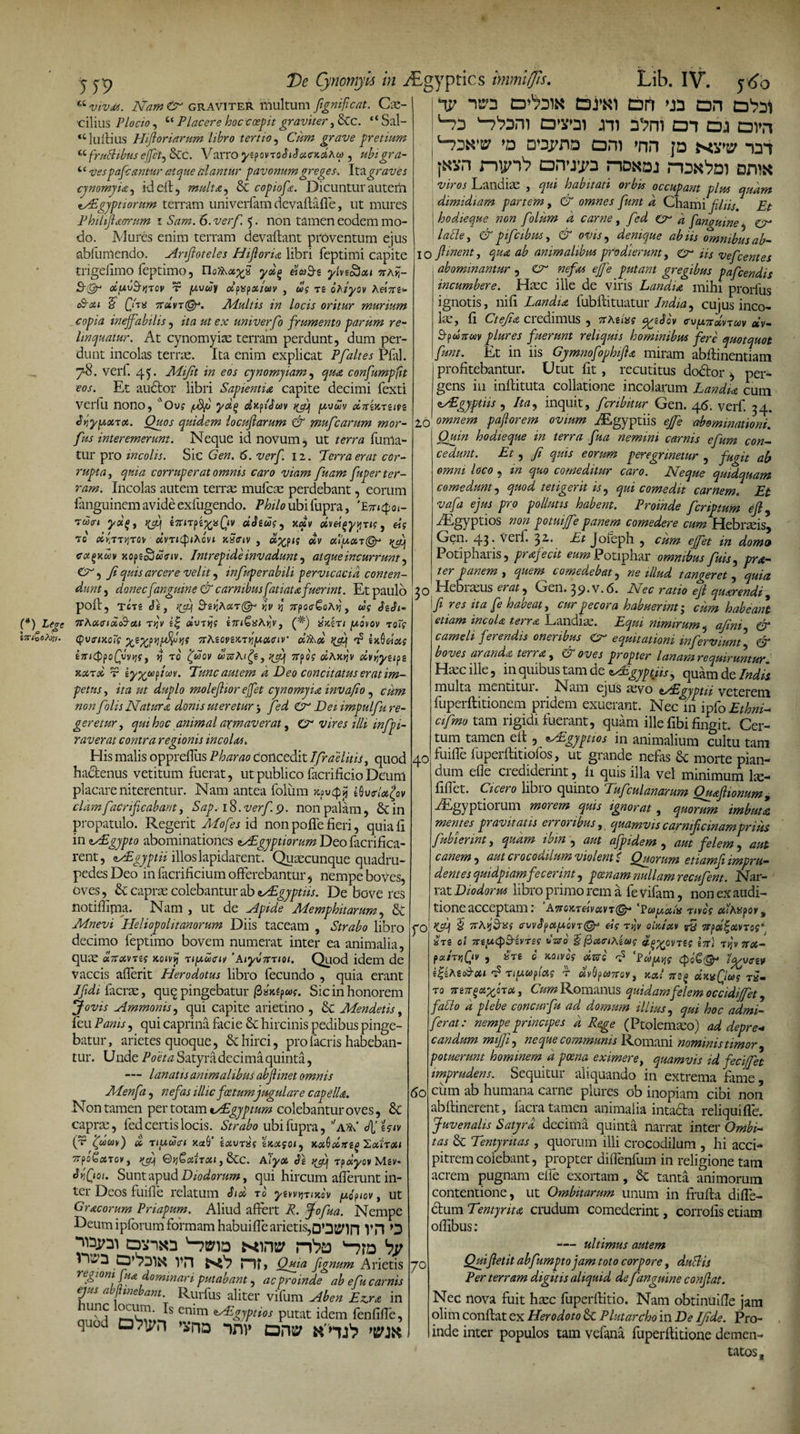 5J9 a vivat. Nam Cr graviter multum fignficat. Cae¬ cilius Plocio, u Placere hoc coepit graviter, 8tc. “ Sal- ‘£ 1 ullius Hiftoriarum libro tertio , grave pretium cc frublibus ejfit, Scc. Varro yepovTO<fi«JW>co&amp;A« , ubigra- 4 c wpafcantur atque alantur pavonumgreges. \ta graves cynomyia, ideff, multa, &amp; copiofe. Dicuntur autem NEgyptiorum terram univerfam devaftafle, ut mures Philfiacrrum t Sam. 6. verf 5. non tamen eodem mo¬ do. Mures enim terram devaffant proventum ejus abfumendo. Arfioteles Hfioria libri feptimi capite trigefimo feptimo, UotAxyfi yd% tiaS-e yivtSiou nAt- S-&amp; otuvSrqTcv r /uvu 1 olpxpxlav , ug n ohiyov A«7r£* c&amp;ou $ 0'« 7tctvt(Qv> Aluit is in locis oritur murium copia inejfabihs , ita ut ex univerfo frumento parum re¬ linquatur. At cynomyias terram perdunt, dum per¬ dunt incolas terras. Ita enim explicat Pfaltes Pfal. 7-8. verf. 45. Mijit in eos cynomjiam, qua confumpfit eos. Et audtor libri Sapientia capite decimi fexti verfu nono, *Ovs /ufi yd% dnfiJav tfijj y,om drtimuiiz JyiyfMzra. Quos quidem lo cuji arum &amp; mufcarum mor- fus interemerunt. Neque id novum, ut terra {lima¬ tur pro incolis. Sic Gen. 6. verf. 12. Terra erat cor¬ rupta, quia corruperat omnis caro viam fuam fuper ter¬ ram. Incolas autem terrae mufcae perdebant, eorum fanguinem avide exfugendo. Philo ubi fupra, Ltu 4 01- 'ruxri ydft tTUTfiyisQv dSiug, xdv dvei^yvjTig, eis 70 dy,TTyjTOV dvvicpiAcvi nSfftv , d%ptg dv ^ CiXqkuv xop ioSuciv. Intrepide invadunt, atque incurrunt, Gr', Ji quis arcere velit, infuperabili pervicacia conten¬ dunt, donec fanguine &amp; carnibus fatiata fuerint. Et paulo poli, tct6 cff, rfijj B-£t]A<XT&amp;‘ yjv k 7tpo<r£oAvj, 00g (*) Legt irAcitndc&amp;ca rqv dvlyjg in iQ^AyiV , (*) «jcct/ [aovov toTg l7n£oAw. <pvtnxoTg 7tAioviK7r[xx<uv‘ dft\d ffijf a? sxGdoij ini<$[><j(jvqgt $ 70 uov ulzrAige, qfij 7tpog dAxtjv dvvjytipg Koi7d r iyyufiuv. Tunc autem a Deo concitatus er at im¬ petus , ita ut duplo molejlior ejfet cynomjia invafio , cum non folis Natura donis uteretur 5 fed Gr Dei impulfu re¬ geretur, qui hoc ammal armaverat, Gr vires illi infpi- raverat contra regionis incolas. His malis oppreffus Pharao concedit 1 praelitis, quod hadtenus vetitum fuerat, ut publico facrificio Deum placare niterentur. Nam antea folum fcputpi} e(W/#<jjv cldmfacrificabant, Sap. iS.verf.9. non palam, &amp;in propatulo. Regerit Alo [es id non poffe fieri, quia fi in NEgjpto abominationes <A£gyptiorum Deo facrifica- rent, irEgyptiiiXlos lapidarent. Quaecunque quadru¬ pedes Deo in facrificium offerebantur , nempe boves, oves, &amp; capras colebantur ab MEgyptiis. De bove res notifiima. Nam , ut de Apide Memphitarum, £e Mnevi Heliopohtanorum Diis taceam , Strabo libro decimo feptimo bovem numerat inter ea animalia, quae dnxvTzg koivij Tifxuam ’Aiyonnoi. Quod idem de vaccis aflerit Herodotus libro fecundo , quia erant Ifidi aerae, quq pingebatur jSs^pwf. Sic in honorem Jovis Ammonis, qui capite arietino , &amp; Mendetis, feu Panis, qui caprina facie &amp; hircinis pedibus pinge¬ batur, arietes quoque, &amp; hirci, pro lacris habeban¬ tur. Unde Poeta Satyra decima quinta, — lanatis animalibus abjlinet omnis Menfa, nefas illic foetumjugulare capella. Non tamen per totam *AL'gyptum colebantur oves, 6c caprae, fed certis locis. Strabo ubi fupra, 4'iMv (r <^o«y) d riuwcri xa&amp;’ ioiVTXs taxsoi) ou TtpoQxTov, jftjq Qti&amp;xiTXi, &amp;C. Aiyoo Jg 7pdycv Msv* Arfioi. Sunt apud Diodorum, qui hircum afferunt in¬ ter Deos fuiffe relatum Sid t0 ytvvvTiKev /aoptov, ut Gracorum Priapum. Aliud affert R. Jofua. Nempe Deumipfbrum formam habuiffearietis,D’3iyin VH O '-irnn nVj by * VH n?> Quia fignum Arietis regioni fua dominari putabant, ac proinde ab e fu carnis ejus abftmebant. Rurfus aliter vifum Aben Ezra in nunc locum. Is enim tAEgyptios putat idem fenfiffe, quod D^n ’sno inv dh^ w hj'? De Cynomyis in iEgyptics hnmijjis. Lib. IV. y6o by iw bn on abis ^1 '-ibm) DT3i jns an aji avn »d pwno am >nn jd xw -nn I«vn ni^n^ anum pidnoj raxbni dhik viros Landiae , qui habitati orbis occupant plus quam dimidiam partem, &amp; omnes funt d Chami filiis Et hodieque non folum d carne, fed Gr d f anguine, Gr ' lacie, &amp; pifcibus, &amp; ovis , denique ab iis omnibus ab- 10 ftinent, qua ab animalibus prodierunt, Gr iis vefcentes abominantur , Gr nefas ejfe putant gregibus pafcendis incumbere. Haec ille de viris Landia mihi prorfus ignotis, nifi Landia fubftituatur India^ cujus inco¬ las, fi Ctefia C1 edimus , 7TA£i&amp;f cvix7txv7cov dv— Srpunrajv plures fuerunt reliquis hominibus fere quotquot funt. Et in iis Gymnofophifla miram abffinentiam profitebantur. Utut fit, recutitus dobtor > per¬ gens in inftituta collatione incolarum Landia cum <N£gyptiis , Ita, inquit, feribitur Gen. 46. verf. 34. 20 omnem pajlorem ovium iRgyptiis ejfe abominationi. Oufin hodieque in terra fua nemini carnis efum con¬ cedunt. Et, Ji quis eorum peregrinetur , fugit ab omni loco , in quo comeditur caro. Neque qmdquam comedunt, quod tetigerit is, qui comedit carnem. Et vafa ejus pro pollutis habent. Proinde feriptum ejl, /Egyptios non potuijfe panem comedere cum Hebraeis^ Gen. 43 • veif. 32.. Et Joicph , cum effet in domo Potipharis, prafecit eum Potiphar omnibus fuis, pra- ter panem, quem comedebat, ne illud tangeret, quia 30 Hebraeus erat, Gen. 39. v. 6. Nec ratio ejl qu,arendi, 'fi res ita fe habeat, cur pecora habuerint; cum habeant etiam incoL terra Landiae. Equi nimirum, afini &amp; cameli ferendis oneribus Gr equitationi mferviunt &amp; boves aranda terra, &amp; oves propter lanam requiruntur Hasc ille, m quibus tam de ^Aegyptus, quam de Mi multa mentitur. Nam ejus aevo esEgmn veterem fuperftitionem pridem exuerant. Nec m ipfo Ethni^ cifmo tam rigidi fuerant, quam ille fibi fingit. Cer¬ tum tamen eff , Egyptios in animalium cultu tam 40 fuiffe fuperftitiofos, ut grande nefas Sc morte pian¬ dum efle crediderint, fi quis illa vel minimum lae- fiffet. Cicero libro quinto Tufculanarum Ouaftionum, /Egyptiorum morem quis ignorat, quorum imbuta mentes pravitatis erroribus, quamvis carnificinam prius fubiennt, quam ibm , aut afpidem , aut felem , aut canem, aut crocodilum violent i Quorum etiamfi impru¬ dentes quidpiam fecerint, poenam nullam recufem. Nar¬ rat Diodorus libro primo rem ai fe vifam, non ex audi¬ tione acceptam 1 A7tOKTeivx\i7@^ 'P0)fA.xliS 7ivog xlAUfOf^ pO K&amp;j &amp; TrAijffKj ewv^i>xixovT@^ eis rliv oln/xv Ad 7Tfd^xvTog\ xtz oi TTtpcpB-ivTes dzeo £ fdaffiAicog d^ovaig \tt\ tvjv not- fOitTrftV , %7t 6 K01VQ9 d&amp;s ^ ‘pdpttjg (poe&amp; e|sAr? 7ipu)fias -f uv^uttov, kxI 7tz^ dwQug ra¬ ro Tttrrya^sTx, Cum Romanus quidam felem occidiffet, fallo a plebe concurfu ad domum illius, qui hoc admi- ferat: nempe principes d Rege (Ptolemaeo) ad depre* c an dum miff, neque communis Romani nominis timor , potuerunt hominem a poena eximere, quamvis id fecijfet imprudens. Sequitur aliquando in extrema fame 60 cum ab humana carne plures ob inopiam cibi non abftinerent, facra tamen animalia intada reliqui fle. Juvenalis Satyra decima quinta narrat inter Ombi- tas &amp; Tentyritas , quorum illi crocodilum , hi acci¬ pitrem colebant, propter diffenfum in religione tam acrem pugnam effe exortam, Sc tanta animorum contentione, ut Ombitarum unum in frufta diffe- ctum Tentyrita crudum comederint, corrofis etiam offlbus : -— ultimus autem jq Quijletit abfumptojam toto corpore, dubiis Per terram digitis aliquid de f anguine confiat. Nec nova fuit hasc fuperffitio. Nam obtinuiffe jam olim conftat ex Herodoto &amp; Plutarcho in De IJide. Pro¬ inde inter populos tam vcfana fuperftitione demen¬ tatos.