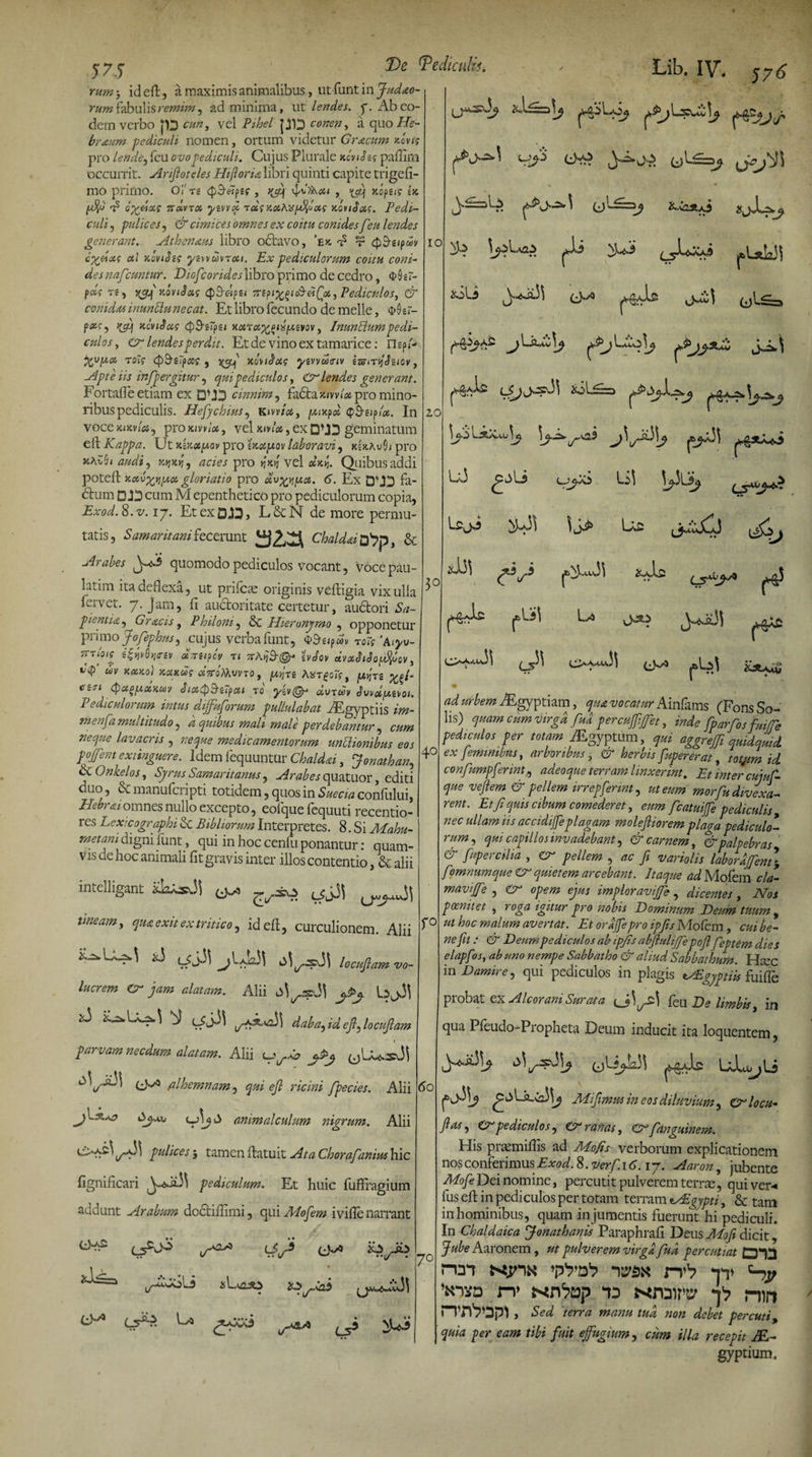 pj- IO 2,0 j 7 j De Dediculii. rum id eft, a maximis animalibus, ut funt in Judio¬ rum fabulis remun, ad minima, ut lendes, f. Ab eo¬ dem verbo p3 cun, vel Pihel JJ13 conen, a quo He- braum pediculi nomen, ortum videtur Gr&amp;cum xbvtg pro lenae, feu ovo pediculi. Cujus Plurale xcvtS zg pailirn occurrit. Ariftoteles Hifloria libri quinti capite t rige li¬ mo primo. Oj't2 (pStifzg , rjj\ , ifj xopsig tx ip oyfixg TSMvioi yzvvd rdg y.xA^^otg xoviJots. Pedi¬ culi , pulices , &amp; cimices omnes ex coitu conides feu lendes generant. Athenaus libro octavo, ’e>c d r QSupcov c^doif cti KoviJzg yzvvwvToti. Ex pediculorum coitu coni- desnafcuntur. Dicfcorideslibro primo de cedro, $6gt- pdg re, 5(cqv xoviJotg cp&amp;flps* 7rzpi%(>tc&amp;eifa} Pediculos, &amp; corudas inunUu necat. Et libro fecundo de meile, <t>0 z7- fxiy hcviSccs <J)9-srpgi xotvctffiwpLivov, InunPtumpedi¬ culos, cr lendesperdit. Et de vino ex tamarice: Tlzpti Xvbtoi T0?g (pSzTpxg , ycf xoviJa? yzvvueiv ksnr^Sziov, Apte iis infpergitur y qui pediculos, A lendes generant. For tali e etiam ex DU3 cinnirn, fadta xml» pro mino¬ ribus pediculis. Hefychiusy Kwtot, pnipos (pB-eip/x. In vocexixvioiy proxmlx, velkwU,exDUD geminatum eft Kappa. Ut k'w#[aov pro 'Uotpov laboravi, kUavQi pro Zhiaudiy xviXYiy acies pro jjjoj' vel dx^. Quibus addi poteft xxv^tjpix gloriatio pro dv^pict. 6. Ex D'JD fa- ftum D.13 cum M epenthetico pro pediculorum copia, Exod. 8. v. 17. Et ex 0 J3, L&amp;N de more permu¬ tatis , Samaritani fecerunt ChaldaiO^pi &amp; Arabes ^-<s5 quomodo pediculos vocant, vocepau- latim ita deflexa, ut prifcae originis veftigia vix ulla fervet. 7. Jam, fi auctoritate certetur, auctori Sa¬ pientia y Grxcis, Philoni y 8c Hieronymo , opponetur primo Jofephusy cujus verba funt, $&amp;«p«» toTs ’Atyv- Krloig s^vdfjirjv dtireipcv t i 7tA>}3‘&amp; zvSov dvxSrfoffiov, ^ UV KXKO) xsoedg «VoMWTO , A$4T£0if, jU>JTS ;££/- trtfi QatpctKw Ji#<p&amp;tfpat jo yzv&amp; *vtm Jwapevoi. Pediculorum intus dijfuforum pullulabat fEgyptiis im- menja multitudo , d quibus mali male perdebantur, cum neque lavacris , medicamentorum unctionibus eos pofent exiinguere. Idem fequuntur Chaldai, Jonathany 6c Gnkelos, Syrus Samaritanus y Arabes quatuor, editi duo, &amp; manufcripti totidem, quos in Sttecia confului, /Mmomnes nullo excepto, eofque fequuti recentio- res Lexicographi ce Bibitorum Interpretes. 8. Si Mahu- metam digni funt, qui in hoc cenlti ponantur: quam¬ vis de hoc animali fit gravis inter illos contentio, &amp; alii 'J Lib. IV. 576 A «ili y^si}] e*? * » 3° 40 intelligant ^ tineam y qua exit ex tritico y idefi, curculionem. Alii id> ij l}] jVda)\ locujlam vo¬ lucrem (A jam alatam. Alii ^ d ab ay id ejly locujlam parvam necdum alatam. Alii alhemnamy qui ejl ricini fpecies. Alii (D\j S animalculum nigrum. Alii pulices 3 tamen fiatuit At a Chorafanim hic fignificari ^<sii.33 pediculum. Et huic fuflragium addunt Arabum doctifiimi, qui Alofem ivifle narrant .A) f° 3 fS LsAav \y. I«^a33 L;J Lil \jX»j <jrA* Usji Us \ ^aJl^ • * L5^AA ^ U Ow*,^U, 31 31 60 * 2tS Jea ' l/ LS' J %U5 7° ad urbem JEgyptiam, qua vocatur Ainfams (Fons So¬ lis) quam cum virga fud percujjifet, mde fparfosfmfe pediculos per totam ASgyptum, qui aggrejji quidquid ex feminibus, arboribus , &amp; herbis fupererat, tatjim id confumpfermt,y adeoque terram linxerint. Et inter cumC- que vejlem &amp; pellem irrepferinty ut eum morfu divexa¬ rent. Etf quis cibum comederet, eum fcatuiffe pediculis , nec ullam iis accidiffeplagam moleftiorem plaga pediculo¬ rum y qui capillos invadebant y &amp; carnem, &amp; palpebras &amp; fupercilia , Cr pellem , ac fi variohs labordjfent\ fomnumque &amp; quietem arcebant. Itaque ad Mofem cla- maviffe y &amp; opem ejus impior avijfe, dicentes, Nos poenitet , roga igitur pro nobis Dominum Deum tuum , ut hoc malum avertat. Et ordfepro ipfis Mofem, cui be¬ ne fit : &amp; Deum pediculos ab ipjis abjhdijfe pofl feptem dies elapfos, ab uno nempe Sabbatho &amp; aliud Sabbathum. Htec in Damire, qui pediculos in plagis trEgyptiis fuifie probat ex A Icor ani Surata feu De limbis, in qua Pfeudo-Propheta Deum inducit ita loquentem, oU^yi uL,u Mi fimus in eos diluvium, Cr lo en- flas y (A pediculos y fA ranas, fAfanguinem. His prasmifiis ad Mofis verborum explicationem nos conferimus Exod. 8. verfi 16.17. Aaron, jubente Mofe Dei nomine, percutit pulverem terrae, qui ver-* fus eft in pediculos per totam terram *ASgypti, &amp; tam in hominibus, quam in jumentis fuerunt hi pediculi. In Chaldaica jfonathanis Paraphrafi Deus Mofi dicit, Jube Aaronem , ut pulverem virga fud percutiat 0*13 ren w ^0 n* no ktdw p mn , Sed terra manu tua non debet percuti, quia per eam tibi fuit effugium y cum illa recepit JE- gyptium.