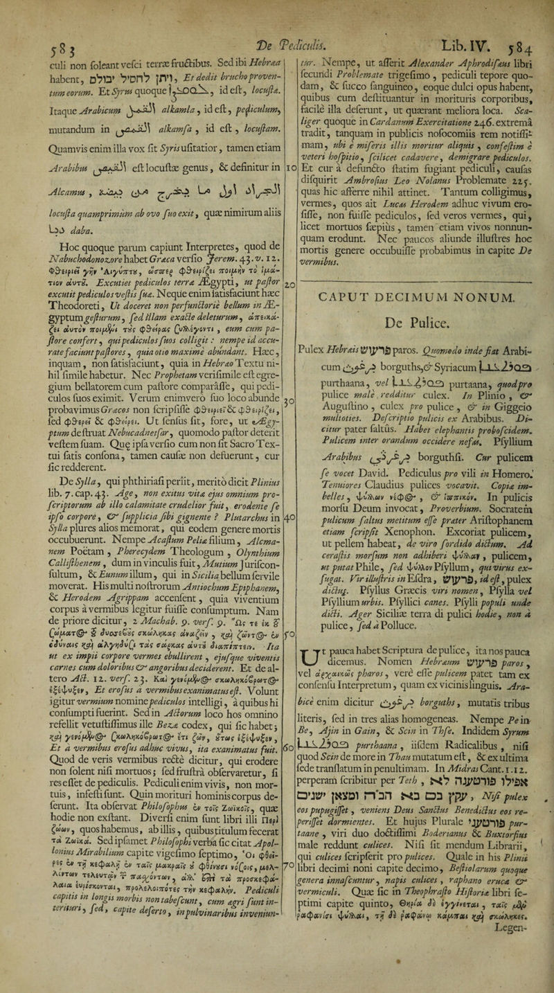 j g j ^Pediculis. culi non foleantvefci terrae frudibus. Sed ibi Hebraa habent, 0^13* VDtl'? JJTl, Et dedit brucho proven- tum eorum. Et Syrus quoque (^SOON., id eft, locufla. Itaque Arabicum iWa.5\ alkamla, id eft, peficulum^ mutandum in alkamfa , id eft , locujlam. Quamvis enim illa vox fit Syris ufitatior, tamen etiam Arabibus eft locuftse genus, & definitur in Do A Icamus , iLdajJ <v locufla quamprimum ab ovo fuo exit, quae nimirum aliis daba. Hoc quoque parum capiunt Interpretes, quod de Nabuchodonozjore habet Graea verfio Jerem. 43.^. 12. $3-g/pj« yijv *A.iy\>7tvts, cJ^ejpi^et 7Toi[ayiv io 4*«- Ticv «ut£. Excutiet pediculos terra iEgypti, ut pafor excutit pediculos vef is fua. Neque enimlatisfaciunt haec Theodoreti, Ut doceret non perfuntlorie bellum mAL- gyptumgeflurum^ fed illam exatle deleturum , «Ve»x#- Qt doro* Ttoifdfyji tx? (p.ENpas' (u/$\eyovn , eum cum pa- fiore confert, qui pediculos fuos colligit : nempe id accu¬ rate faciuntpafores , quia otio maxime abundant. Haec , inquam , non fatisfaciunt, quia in Hebrao Textu ni¬ hil fimile habetur. Nec Prophetam verifimile eft egre¬ gium bellatorem cum paftore comparaffe, qui pedi¬ culos fuos eximit. Verum enimvero fuo loco abunde 10 20 Lib.IV. 584 tur. Nempe, ut aderit Alexander Aphrodifeus libri fecundi Problemate trigefimo , pediculi tepore quo¬ dam , £c fucco fanguineo, eoque dulci opus habent, quibus cum deftituantur in morituris corporibus, facile illa deferunt, ut quaerant meliora loca. Sca- liger quoque in Cardanum Exercitatione 246. extrema tradit, tanquam in publicis nofocomiis rem notifti- mam, ubi e mifens illis moritur aliquis , confefiim e veteri hofpitio , fcilicet cadavere, demigrare pediculos. Et cura defundo ftatim fugiant pediculi, caufas difquirit Ambrofius Leo Nolanus Problemate 225. quas hic afferre nihil attinet. Tantum colligimus, vermes, quos ait Lucus Herodem adhuc vivum ero- fiffe, non fuiffe pediculos, fed veros vermes, qui, licet mortuos faepius, tamen etiam vivos nonnun- quam erodunt. Nec paucos aliunde illuftres hoc mortis genere occubuiffe probabimus in capite De vermibus. probavimusGracos non fcripfifie ^S-gjpigr&CtpSgip/^g/, fed 43-g?« & 4)3-«psi. Ut fenlus fit, fore, ut aALgj- ptum deftruat Nebucadnetfar, quomodo pa.ftor deterit veftem (uam. Quq ipfa verfio cum non fit Sacro Tex- tui fatis confona, tamen caufe non defuerunt, cur fic redderent. De Sylla, qui phthiriafi periit, merito dicit Plinius hb. 7. cap. 43* > 'non exitus vita ejus omnium pro¬ fer iptorum ab illo calamitate crudelior fuit, erodente fe ipfo corpore, O' fupplicia Jibi gignente ? Plutarchus in Sylla plures alios memorat, qui eodem genere mortis occubuerunt. Nempe Acaftum Pelia filium, Alcma- nem Poetam , Pherecydem Theologum , Olynthium Callijlhenem, dum in vinculis fuit, Mutium J urifeon- fultum, & Eunum illum, qui in Sicilia bellum fervile moverat. His multi noftrorum Antiochum Epiphanem, Herodem Agrippam accenfent, quia viventium corpus a vermibus legitur fuiffe confumptum. Nam de priore dicitur, 2 Machab. 9. verf. 9. n; Tg U $ Qd[xotT& $ Svosi&s cxuAKKsig olvot^eiv , ^ gavt@- hv Movetis ^ dhyyjSvQi txs cccqkus «ut3 Sixniitieiv. Ita ut ex impii corpore vermes ebullirent, ejufque viventis carnes cum doloribus Cr angoribus deciderent. Et de al¬ tero Ati. 12. verf 23. Ksc< yevlpfyj& (ntwA^xo^pwr^ Tt erofus a vermibus exanimatus ejl. Volunt igitur vermium nomine pediculos intelligi, a quibus hi confumpti fuerint. Sed in Ahiorum loco hos omnino refellit vetuftifiimus ille Beea codex, qui fic habet j vjj[ yiVQ[dfa& QKUAyiKo£pa)T(Gy in £uv , XTUS , Et a vermibus erofus adhuc vivus, ita exanimatus fuit. Quod de veris vermibus rede dicitur, qui erodere non folent nifi mortuos j fedfruftra obfervaretur, fi resedet de pediculis. Pediculi enim vivis, non mor¬ tuis, infeftifunt. Quin morituri hominis corpus de¬ lerunt. Ita obfervat Philofophus tv toTs 7L&>ixoif, quae hodie non exftant. Diverfi enim funt libri illi risp) quos habemus, ab illis, quibus titulum fecerat Toi ZuiKci. Sed ipfamet Philofophi verba fic citat Apol¬ lonius Mirabilmrn capite vigefimo feptimo, ‘oi <p0ri- P^s cv Tjj xg<4«Aii b> txif [/.xnfoiTs 8 cpftivx<n vofois, y.i\- Actcov TgAguTay r «*’ ’Qcx id vfonttpd- Kccicc gvp/o-xovTaj, ?rpoAgA(j,'7roTgf r>jy xg<4<J«A>jV. Pediculi capitis m ongis morbis non tabefeunt, cum agri funt in¬ terituri, fe , capite deferto t inpulvinaribus inveniun- ,3° 40 60 70 CAPUT DECIMUM NONUM. De Pulice. Pulex Hebrais paros. Quomodo inde Jiat Arabi¬ cum borguths,er Syriacum jLLk25C125 purthaana, vel |-Xk2302l purtaana, quod pro pulice male redditur culex. In Plinio , Cr Auguftino , culex pro pulice , & in Giggeio multoties. Defcriptio pulicis ex Arabibus. Di¬ citur pater faltus. Habet elephantis probofeidem„ Pulicem inter orandum occidere nefas. Pfylliutn Arabibus csW* borguthfi. Cur pulicem fe vocet David. Pediculus pro vili in Homero.’ Tenuiores Claudius pulices vocavit„ Copia im¬ belles , n<p& , & lzff7UKov. In pulicis morlii Deum invocat, Proverbium. Socratem pulicum faltus metitum ejfe prater Ariftophanera etiam fcripfit Xenophon. Excoriat pulicem, ut pellem habeat, de viro for dido ditium. Ad ceraflis morfum non adhiberi vI/uJAay , pulicem, ut putat Phile, fed Nmov Pfyllum, qui virus ex- fugat. Vir illufiris in Efdra, yidejl, pulex dicluj. Pfyllus Graecis viri nomen, Plylla vel Pfyllium urbis. Pfyllici canes. Plylli populi unde diili. Ager Siciliae terra di pulici hodie, non d pulice, fed d Polluce. Ut pauca habet Scriptura de pulice, ita nos pauca dicemus. Nomen Hebraum paros , vel dgxxiKcSf pharos, vere effe pulicem patet tam ex confenfu Interpretum, quam ex vicinis linguis. Ara¬ bice enim dicitur borguths, mutatis tribus literis, fed in tres alias homogeneas. Nempe Pe ia Be, Ajin in Gain, 6c Scin in Thfe. Indidem Syrum (.0^25025 purthaana , iifdem Radicalibus , nifi quod Scin de more in Thau mutatum eft, & ex ultima fede tranflatum in penultimam. In Midras Cant. 1.12. perperam feribitur per Teth , d>j®> jssDi n'nn xa D3 ypy, n,ji p„ieX eos pupugijfet, veniens Deus Sancias Bene ditius eos re- penjfet dormientes. Et hujus Plurale tjpOl)*) pur- taane , viri duo dodifiimi Boderianus Buxtorfius male reddunt culices. Nifi fit mendum Librarii, qui culices fcripferit pro pulices. Quale in his Plinii libri decimi noni capite decimo, Befltolarum quoque genera innafeuntur, napis culices , raphano eruca & vermiculi. Quae fic in Theophraflo Hiftoria libri fe- ptimi capite quinto, ©nfa Se iyymxeu , rx7c ?a<$0ivlfl TiJ SI pX$»VU) K»y.7rau ^ ffXuMKtt. Legen-