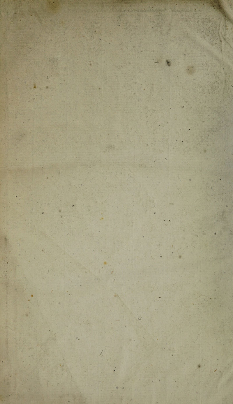 » ; f ' ■% > r- * / « • /' ■ i i \ * 'X v' i \ av, . . X. sV •*r i * : \ f- A X > < t . i ' • < * * * ) ‘f ) / V* H. ’ ^ . t *• # 4 t * 4 ► ✓ - i