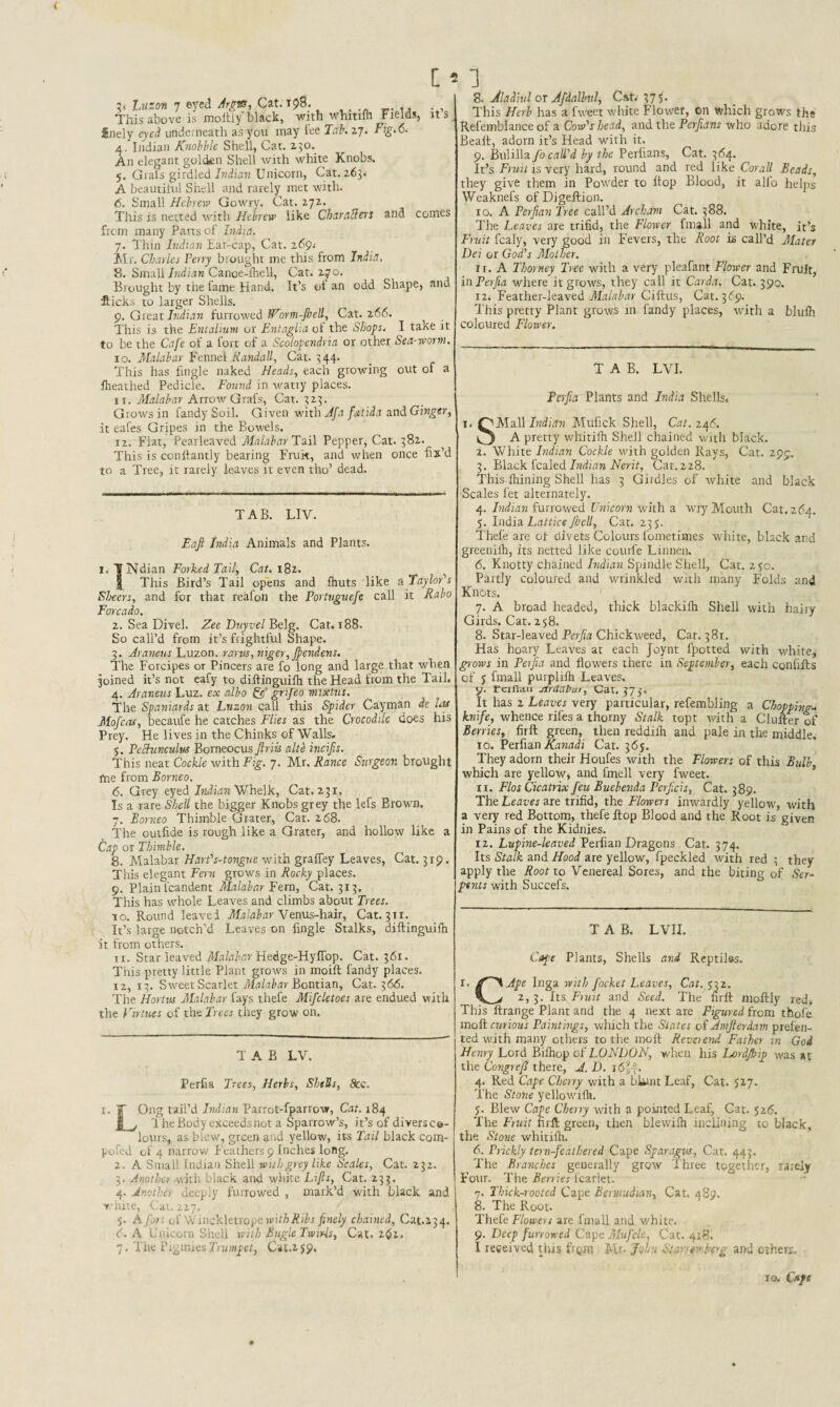 it’s ^ Luzon 7 eyed Argus, Cat. 198. , ., This above is mottiy black, with whitilh Fields, finely eyed underneath as you may lee Tab. 17. Fig.6. 4. Indian Knobble Shell, Cat. 150. An elegant golden Shell with white Knobs. 5. Grals girdled Indian Unicorn, Cat. 263. A beautiful Shell and rarely met with. 6. Small Hebrew Gowry. Cat. 272. This is netted with Hebrew like Chambers and comes from many Parts of India. 7. Thin Indian Ear-cap, Cat. 269* Mr. Charles Ferry brought me this from India. 8. Small Indian Canoe-fhell, Cat. 270. Brought by the fame Hand. It’s ot an odd Shape, and flicks to larger Shells. 9. Great Indian furrowed IVorm-Jhell, Cat. 266. This is the Entalium or Entaglia oi the Shops. I take it to be the Cafe of a fort of a Scolopendria or other Sea-worm. 10. Malabar Fennel Randall, Cat. 344. This has fingle naked Heads, each growing out of a fheathed Pedicle. Found in watry places. 11. Malabar Arrow Grafs, Cat. 323. Grows in fandySoil. Given with Afa fstida and Ginger, it eafes Gripes in the Bowels. r 2. Flat, Pearleaved Malabar Tail Pepper, Cat. 382. This is conllantly bearing Fruit, and when once fix’d to a Tree, it rarely leaves it even tho’ dead. TAB. LIV. Eafi India Animals and Plants. 1. TTNdian Forked Tail, Cat. 182. | This Bird’s Tail opens and fhuts like a Taylor's Sheers, and for that reafoii the Portuguefe call it Rabo Forcado. 2. Sea Divel. Zee Duyvel Belg. Cat. r88. So call’d from it’s frightful Shape. 3. Araneus Luzon, rarus, niger, Jfendens. The Forcipes or Pincers are fo long and large that when joined it’s not eafy to diftinguifh the Head from the Tail. 4. Araneus Luz. ex albo grifeo mixtus. The Spaniards at Luzon call this Spider Cayman de Lot Mofciu, becaufe he catches Flies as the Crocodile does his Prey. He lives in the Chinks of Walls. 5. Peclunculw Bomeocus Jlriis alte incifis. This neat Cockle with Fig. 7. Mr. Ranee Surgeon brought fne from Borneo. 6. Grey eyed Indian Whelk, Cat. 231. Is a rare Shell the bigger Knobs grey the lefs Brown. 7. Borneo Thimble Grater, Cat. 268. The outhde is rough like a Grater, and hollow like a Cap or Thimble. 8. Malabar Hart's-tongue with graffey Leaves, Cat. 319. This elegant Fern grows in Rocky places. 9. Plain fcandent Malabar Earn, Cat. 313. This has whole Leaves and climbs about Trees. to. Round leaved Malabar Venus-liair, Cat. 311. It’s large notch’d Leaves on frngle Stalks, diftinguifh it from others. rr. Star leaved Malabar Hedge-Hyffop. Cat. 361. This pretty little Plant grows in moift Tandy places. 12, 13. Sweet Scarlet Malabar Bontian, Cat. 366. Tire IIortus Malabar fays thefe Mifcletoes are endued with the Virtues of the Trees they grow on. TAB LV. Perfia Trees, Herbs, Shells, 8cc. 1. Ong tail’d Indian Parrot-fparrow, Cat. 184 j j 1 he Body exceeds not a Sparrow’s, it’s of divers co¬ lours, as blew, green and yellow, its Tail black com- pofed of 4 narrow Feathers 9 Inches long. 2. A Small Indian Shell with grey like Scales, Cat. 232. 3. Another with black and white Lifts, Cat. 233. 4. Another deeply furrowed , mark’d with black and white, Cat. 227. 5. A for of Yv inckletrope with Ribs finely chained, Cat.234. (. A Unicorn Shell with Bugle Twirls, Cat. 2£>i. 7. The Primes Trumpet, Cal.259. 8. Jladiitl or Afdalbul, Cat. 375. This Herb has a fweet white Flower, on which grows the Refemblance of a Cow's head, and the Perfians who adore this Bealt, adorn it’s Head with it. 9. Bulilla fo call'd by the Perlians, Cat. 364. It’s Fruit is very hard, round and red like Corall Beads, they give them in Powder to flop Blood, it alfo helps Weaknefs of Digeftion. 10. A Perfian Tree call’d Archain Cat. 388. The Leaves are trifid, the Flower fmall and white, it’s Fruit fcaly, very good in Fevers, the Root is call’d Mater Dei or God's Mother. n. A Thorney Tree with a very pleafant Flower and Fruit, in Perfia where it grows, they call it Carda, Cat. 390. 12. Feather-leaved Malabar Ciftus, Cat. 369. This pretty Plant grows in fandy places, with a blulh coloured Flower. TAB. LVI. Perfia Plants and India Shells. 1^ QBlaB Indian Mufick Shell, Cat. 246. ^ A pretty wliitifh Shell chained with black. 2. White Indian Cockle with golden Rays, Cat. 299. 3. Black fealed Indian Nerit, Cat. 228. This firming Shell has 3 Girdles of white and black Scales fet alternately. 4. Indian furrowed Unicorn with a wry Mouth Cat. 264. j. India Lattice Jhcll, Cat. 235. Thefe are of divets Colours lometimes white, black and greenilh, its netted like courfe Li mien. 6. Knotty chained Indian Spindle Shell, Cat. 250. Partly coloured and wrinkled with many Folds and Knots. 7. A broad headed, thick blackilh Shell with hairy Girds. Cat. 258. 8. Star-leaved Perfia Chickweed, Cat. 381. Has hoary Leaves at each Joynt fpotted with white, grows in Perfia and flowers there in September, each conlifts of j fmall purplilh Leaves. ?. Fcifitiu Ardabar, Cat. 373. t has 2 Leaves very particular, refembling a Chopping* knife, whence riles a thorny Stalk topt with a Clufter of Berries, firft green, then reddilh and pale in the middle. 10. Perfian Kanadi Cat. 365. They adorn their Houfes with the Flowers of this Bulb which are yellow, and fmell very fweet. 11. Flos Cicatrix feu Buebenda Pcrjicis, Cat. 389. The Leaves are trifid, the Flowers inwardly yellow, with a very red Bottom, thefe flop Blood and the Root is given in Pains of the Kidnies. 12. Lupine-leaved Perfian Dragons Cat. 374. Its Stalk and Hood are yellow, fpeckled with red ; they apply the Root to Venereal Sores, and the biting of Ser¬ pents with Succefs. TAB. LVII. Cape Plants, Shells and Reptil&s, I. Ape Inga with focket Leaves, Cat. 532. 2, 3. Its Fuat and Seed. The firft moftly red. This ftrange Plant and the 4 next are Figured from thofe moft curious Paintings, which the States of Amjterdam prefen- ted with many others to the moft Reverend Father in God Henry Lord Bifhop of LONDON, when his Lord/hip was at the CongreJ? there, J. D. i6~~. 4. Red Cape Cherry with a blunt Leaf, Cat. 527. The Stone yellowilh. 5. Blew Cape Cherry with a pointed Leaf, Cat. 526. The Fruit firft green, then blewifh inclining to black, the Stone whitifh. 6. Prickly tern-feathered Cape Sparagvs, Cat. 443. The Branches generally grow Three together, rarely Four. The Berries lcarlet. 7. Thick-rooted Cape Bermudian, Cat. 489. 8. The Root. Thefe Flowers are fmall and white. 9. Deep furrowed Cape Mufcle, Cat. 418. I received this from Mr. John Sttug and others. 10. Cafe