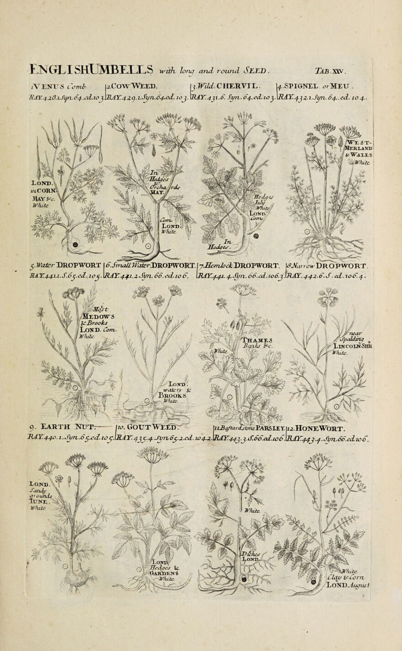 / Engli shUmbeixs with, loncf and round SEED Ta b xw iVlNFS zCowWEXB. j.Wild.CHEUVTL. U.SPIGNXL urlXU . 7?AY4-2,8aSifn.64.ecL.10 JJ)jL'iY.4.2,y.i.Syri.64cd, ioj. \RAY.4y.6. Syn. 6406.10 y\RAY. 433.1.Syn. 64.06. 10 4. XST-I :bxant>! !l fcWiXES ■Mv/utc. 5.Water DROPWORT 16.Small U ^rDROPWORT. I yJScmlock DROPWORT. \6Yancw DROP WO RT. RAY.4.41.1.S.6yed. 10J. \RAY- 441.2..Sun. 66. cd.10 6. \TJY44j, 4.Sun. 66.cd. 106.j.lRAY. 443-6.6. cd. jo6.4. itws \ }M . • V fL 1 , ;■ Mas t %; | JIeXHJWS 'j IcBroohs (IL \ ILoITD. com. \JW , . - \4 LI % f r near Spaldtrty x INC'oinShk White, 9. Earth Mjtt-— \w y —.— - --~|zz^^%u<4r&7icPARSLEYlzj.HONXW()R.T. lid Y. 440.1. Syn. 6y.ed. 104. \RA Y 4jc. 4 Syn oy.j.cd .104.2,. \R6Y443 .j. S. 6o.cd. 106. \RIY44y.4. Sim. 66. ed w 6. IOND Sandv arcimds d lUKE M^hite 4-ihv r&m v [ v* ^f/hite S : j§\ri Clay if-Corn EORD Aumut