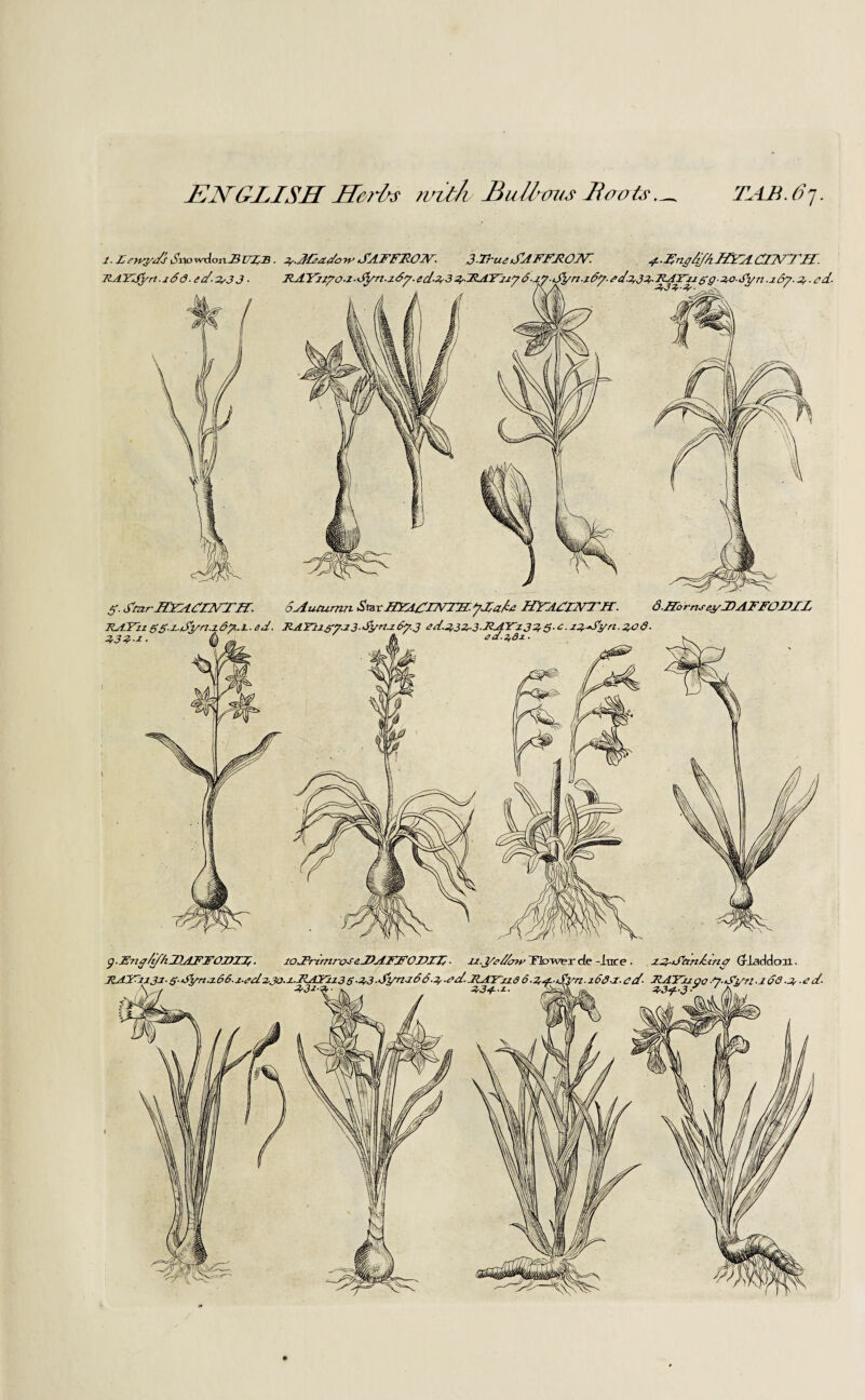 ENGLISH Marks wit/i Bullous Haote TNR. 6q. i. Lftvydj Si\o '■v'don.B ILL. y.dEzzdo ry SAFFRON 3-Fuzz /SdFFFOTF. y. . Eng/ifA JOEL ClTV^J LA. ff. S'rnrJDLdEZLmi. 6Autumn £tar ffiTAErNTir. HYAFI2ZTJA. d.ITo rns&yAA FFOJLAE HAYiz SS.t.Ayn.t63.X. ed. RATiJS7-23-dyn.i67.3 ^d.Z3Z-3-FAY'z3ZS-t.JzAyn.zod. 13Z *. iHi ^ A td.^az. g. Eziff/tfh EdFFOHTL ■ loJFrtmro-ttAAFFOFZL • -U.ye Fair Tlower c(e -luce • zz-AtmA-incr Grladdcm.