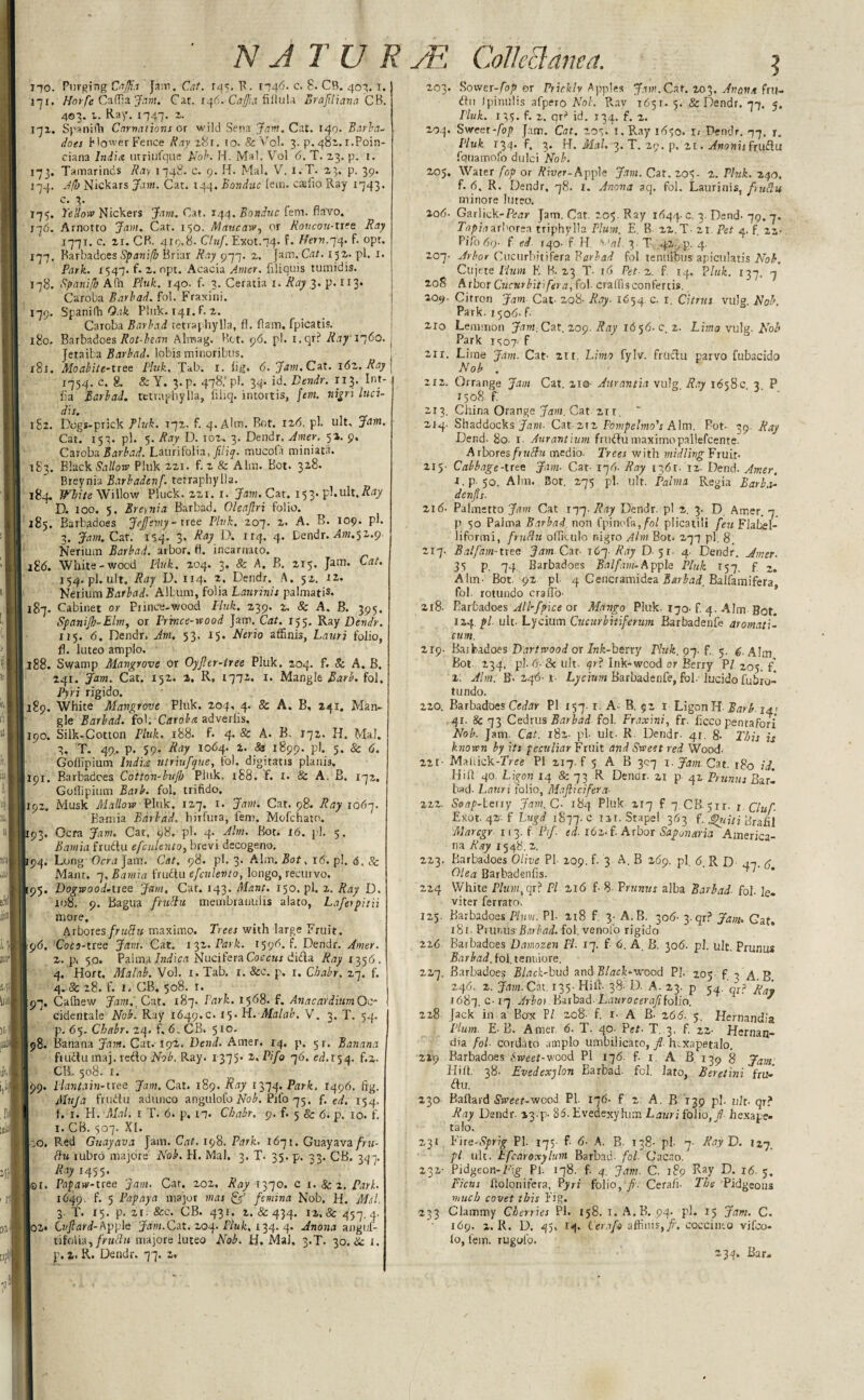 NJTUR sE Comama. 170. Purging CaJJia Jam. Cat. u\s. R. 1746. c. 8. CB. 403. 1. 171. Horfe Caffia Jam. Cat. 146. Caffia filiula Brafiliana CB. 403. 1. Ray. 1447. 2- 172. Spanifh Carnations or wild Sena Jam. Cat. xqo. Barba* does I*lower Fence Ray 281. 10. & Vol. 3. p. 481. r.Poin- ciana India utriufque Nob. H. Mai. Vol 6. T. 23. p. 1. 173. Tamarinds Ray 1748. c. 9. H. Mai, V. i.T. 23. p. 39. 174. d/I) Nickars Jam. Cat. 144. Bonduc lem. cafio Ray 1743. c. 3. T75. Yellow Nickers Jam. Cat. 144. Bonduc fem. flavo. j-j6. Arnotto Jam. Cat. 150. Maucaw, or Roucou-tree Ray 1771. c. zx. CB. 419.8. Cluf. Exot.74. f. Hern.74. f. opt. 177. Barbadoes Spanifb Briar Ray 977. 2. Jam. Cat. 152. pi. 1. Park. X547* f. 2. opt. Acacia Amer. filiquis tumidis. 178. Spani/b A(h Pink. iqo. f. 3. Ceratia 1. Ray 3. p. 113* Caroba Barbad. fol. Fraxini. 179. Spanifh Oak Pink. 141. F. x. CaToba Bar bad tetraphylla, fl. Ham. fpicatis. 180. Barbadoes Rot-bean Alnaag. Bet. 96. p!. i.qr? Ray 1760. Jetaiba Barbad. lobis minoribus. x8x. Moabite-ttee Pluk. Tab. 1. fig. 6. Jam. Cat. 162. Ray 1754. c. 8. & Y. 3-p. 478; pi. 34. id. Dendr. 113. Int- fia Barbad. tetraphylla, filiq. intortis, fem. nigri luci- dis. 182. Dogs-prick Pluk. 172. f. 4. Aim. Rot. 126. pi. lilt. Jam. Cat. 157. pi. 5. Ray D. iox. 3. Dendr. Amer. 51. 9. Caroba Barbad. Laurifolia, Jiliq. mucol'i miniatii. 183. Black Sallow Pluk 221. f. 2 & Aim. Bot. 328. Breynia Barbadenf. tetraphylla. 184. White Willow Pluck. 221. r. Jam. Cat. 153. pl.ult.&xy D. 100. 5. Breynia Barbad. Oleaftri folio. 185. Barbadoes Jejfemy-tree Pluk. 207. 2. A. B. 109. pi. 3. Jam. Car. '154. 3. Ray D. irq. 4. Dendr. Aw.5z.9- Nerium Barbad. arbor, fl. incarnato. iS<5. White-wood Pluk, 204. 3. & A. B. 2x5. Jam. Cat. 154. pi. ult. Ray D. 114. 2, Dendr. A. 52. 12. Nerium Barbad. Album, folia Laurinis pa!matis- 187. Cabinet or Prince-wood Pluk. 239. z. 8c A. B. 395. Spanifh-Elm, or prince-wood Jam. Cat. 155. Ray Dendr. 115. 6. Dendr. Am. 53, 15. Nerio affinis, Lauri folio, fl. luteo amplo. 188. Swamp Mangrove or Oyjler-iree Pluk. 204. f. Sc A. B. 241. Jam. Cat. 152. 2, R, 1772. 1. Mangle Barb, fol, Py'ri rigido. 189. White Mangrove Pluk. 204, 4. & A. B, 241. Man¬ gle Barbad. fol. Caroba adverbs. 190. Silk-Cotton Pluk. 188. f. 4* & A. R- 172. H. Mai. 3. T. 49.. p. 59. Ray 1064. 2. & 1899. pi. 5. & 6. Goffipium lndis utriufque, fol. digitatis planis. 191. Barbadoes Cotton-bujb Pluk. x88. f. l. 8c A, B. 172. Goflipium Barb. fol. trifido. 192. Musk Mallow Pluk. 127. 1. Jam. Cat. 98. Ray 1067. Eamia Bail ad. hirfuta, fem. Mofchato. [93. Ocra Jam. Cat, 98. pi. 4- Aim. Bot. X6. pi. 5. Baniia frudu efculento, brevi decogeno. 194. Long Ocra Jam. Cat. 98. pi. 3. Aim. Bot. 16. pi, <$. & Manr. 7 .Bamia frudu efculento, longo, recurvo. [95. DogwoodAiee Jam, Cat. 143. Mam. 150. pi. 2. Ray D. 108. 9. Bagua fruttu membranulis alato, Lafetpitii more. Arbores fruFtu maxirno. Trees with large Fruit. 19(5. Coca-tree Jam. Cat, 132. Park. 159b. f. Dendr. Amer. 2. p, 50. Palma Indica NuciferaCoccwr dida Ray 1^6. 4. Hort. Malab. Vol. 1. Tab. x. &c. p. 1. Chabr. 27. f. 4.8c 28. f. 1. CB. 508. r. 197. Calhew Jam. Cat. 187. Park. 1568. f. AnacardiumOc- cidentale Nob. Ray 1649.0. 15. H. Malab. V. 3. T. 54. p. 65. Chabr. 24. f. 6„ CB. 510. 198. Banana Jam. Cat. 192. Dend. Amer. 14. p. 5r. Banana frudu maj. redo Nob. Ray. 1375- 2 .Pifo 7 6. ed.i 54. f.z. CB, 508. 1. 99. Plantain-tree Jam. Cat. 1S9. Ray 1374. Park. 1496. fig. Muja frudu adunco angulofo Nob. Pifo 75. f. ed. 154. f. 1. H. Mai. 1 T. 6. p. 17. Chabr. 9. f. 5 & 6. p. 10. f. 1. CB. 507. XI. Lo. Red Guayava Jam. Cat. 198. Park. 1671. Guayava fru- ttu rubro majore Nob. H. Mai. 3. T. 35. p. 33. CB. 347. Ray 1455. lot. Papaw-tree jam. Cat. 202. Ray 1370. c x. 8c 2. Park. 1649, f. 5 Papaya major mat & femina Nob. H. Med. 3 T. 15. p. 21.&C. CB. 431. 2. & 434. lx, fe 457.4. |02* Cvftard-Apple Jam.Cat. 204. Pluk. 134. 4. Anona anguf- tifolia,/tMt?» majore luteo Nob. H. MaJ. 3.T. 30. & 1. p. 2. R. Dendr. 77. 2. 203. Sower-fop or Pricklv Apples Jam. Cat. 203. Anona frit— du Ipinulis afpero Not. Ray 1651. 5. & Dendr. 77. 5. Pluk. 135. f. 2. ad id. 134. f. z. 204. Sweet-fop Jam. Cat. 207. 1. Ray 1650. i< Dendr. 77. r. Pluk 134. f. 3. H. Mai. 3. T. 29. p. zx. Anonis frudu fquamofo dulci Nob. 205. Water fop or tfiwer-Apple Jam. Cat. 205- 2. Pluk. 240. f. 6. R. Dendr, 78. 1. Anona aq. fol. Laurinis, fruftu minore luteo. 206. Gar lick-Pea’)- Jam. Cat. 205. Fay 1644- c. 3. Dend- 79. 7. Tapiaarborea triphylla Plum. E. B 22. T- 21. Pet 4. f. 22* Pifo 69. f ed 140- f H v’o/. 3. T. 42 , p. 4. 207- Arbor Cucurbitifera Barbad fol tenuibus apiculatis Nob. Cujere Plum K B. 23 T- x6 Pet- 2. f. 14. Pluk. 137. 7 208 Arbor Cucurbitifera,fob cralfisconfertis. 209- Citron Jam Cat- 2q8- Ray- 1654. c. I. Citrus vulg. Nob. Park. 1506- f- 2x0 Lemmon Jam. Cat. 209. Ray 1656. c. 2. Lima vulg. Nob Park 1 <507- f 21 r. Lime Jam. Cat- 21 r. Lima fylv. frudu parvo fubacido Nob . 212. Orrange Jam Cat. zia- Aurantia vulg. Ray 1658c. 3, P 1508. f. 213. China Orange Jam. Cat 211. 214- Shaddocks jaw- Cat 212 Pompelmo's Aim. Pot- 39. Ray Dend. 80. i- Aurantium frudu maxirnopallefcente. Aibores fruftu medio- Trees with mid ling Fruit- 215- Cabbage-tree Jam- Cat- 176- Ray 1361- 12- Dend. Amer. 1. p- 50, Aim. Bot. 275 pi. ulr. Palma Regia Barba- denfis. 2x6- Palmetto Jam Cat ryq. Ray Dendr. p! 2. 3. D. Amer. 7 p 50 Palma Barbad non fpinofa,/b/ plicatili feu Flahel- liformi, fruflu oflkulo nigro Aim Bot. 277 pi. g 217. Balfam-tree Jam. Cot- 167. Ray D- 51- 4. Dendr. Amer. 35 p. 74 Barbadoes Balfam.Apple Pluk 157. f Aim- Bot. 92 pi 4 Cencramidea Barbad. Balfamifera fol. rotundo cralTo- 218. Barbadoes All-fpice or Mango Pluk. 170- f. 4. Aim Bot. iz^.pl ult- Lycium Cucurbitiferum Barbadenfe aromati- cuitt. 2x9- Barbadoes Dartrvood or Ink-berry Pluk. 97. f. 5. 6. Aim Bot. 234. pi- 6- Sc ult. qr? Ink-wcod or Berry P/ 205. f 2. Aim. B-246-1- Lycium Barbadenfe, fob iucido fubro- tundo. 220. Barbadoes Cedar Pi 157. r. A- B. 92 1 Ligon H- Barb. 14< 41. & 73 Cedrus Bar bad fol. Fraxini, fr- ficco pentafori Nob. Jam. Cat. 182- pi- ult- R Dendr- 41. 8. This is known by its peculiar Fruit and Sweet red Wood- 22r■ Maliick-ZYee PI 217- f 5 A B 307 1. Jam Cat. xg0 id. Hifi 40. Ligon 14 & 73 R Denar- 21 p 42 Prumts Bar- bad- Latin folio, Maflicifera- 222. Soap-leuy Jam. C- 184 Pluk 217 f 7 CB jir- t Cluf Exot- 42T- f Lugd 1877. c xix. Stapei 363 f. ghtjti Brafil Marcgr 113. f Pif ed. 162. f. Arbor Sapunaria America¬ na Ray 1548. 2. 223. Barbadoes Olive PI- 209. f- 3 A. B 269. pi. 6. R D -an A Olea Barbadenfis. ' 224 White Plum, qr? PI 216 f- 8- Prunus alba Barbad- fol- le. viter ferrato. 125. Barbadoes Plum. PI- 218 f 3- A. B. 306- 3. qr? Jam, Gat. 181 - Prut,us Barbad. fol. venofo rigido 226 Barbadoes Damozen Fl. 17. f 6. A B. 306. pi. ult. Prunus Barbad. fol. tenxtiore. 227. Barbadoes E/ncIt-bud and Black-wood PJ. 205- f 7 A. B 246. 2. Jam. Cm. 135- Hifi- 38- D. A. 23. p ^. qr? 1687. c'll Arbor Barbad- LaurocerafiioYio. * 228 Jack in a Box P/ zo2- f. x- A B- 266. 5. Hernandia Plum. E-B. Amer. 6. T. 40. Pet- T. 3, f. 22- Hernan- dia fol- cordato 3mplo umbilicato, fl- h-xapetalo. 2x9 Barbadoes Aweet-wood PI 176. f. i. A B 139 8 jam_ Hill. 38- Evedexylon Barbad- fol. lato, Beretini fru¬ du. 230 Ballard SrPeet-wcod PI. 176- f 2. A. B 139 pb ult. qr? Ray Dendr. x3-p- 86. Evedexylum Lauri folio,/ hexape- talo. 231 Fire-^t/ PI. 175- f- 6■ A. B- 138- pi- 7- Ray D. 127, pi ult. Efcaroxylum Barbad- fol- Cacao. 232- Pidgeon-F/ Pi. 178. f. 4. Jam. C. 189 Ray D. 16. 5. Ficus flolonirera, Pyri folio, /• Cerali- The Pidgeous much covet this Pig. 233 Clammy Cherries PI. 158. 1. A.B. 94. pi. 15 Jam. C. 169. 2. R. D. 45. 14. Cerafo affinis,/. coccinto vjfco- lo, fem. rugolo. 234. Bar-