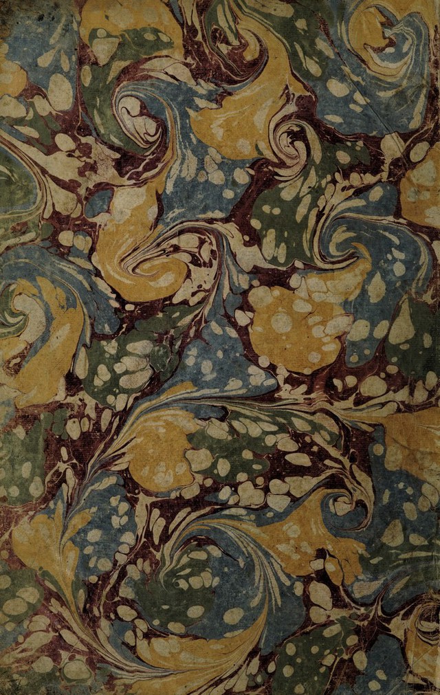 No text description is available for this image