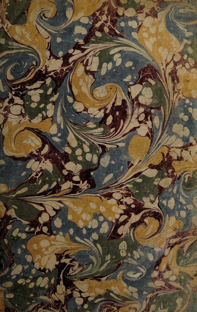 No text description is available for this image